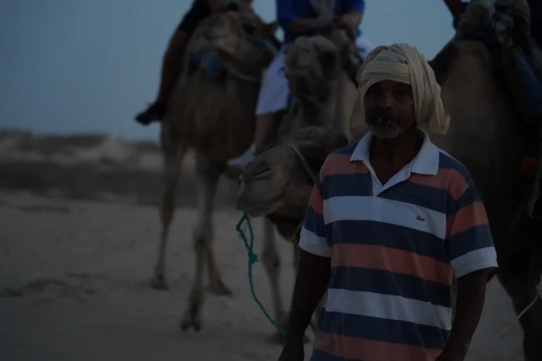 Explorez la richesse culturelle et naturelle de la Tunisie Envie de découvrir le sud tunisien dans toute sa splendeur ? Que vous partiez de Hammamet, Sousse ou Monastir, une excursion bien planifiée vous permet d’explorer les merveilles de la Tunisie. Ce voyage, mêlant histoire, nature et traditions, est une véritable immersion dans l’âme du pays. De la douceur des plages aux portes du désert, suivez-nous pour un circuit inoubliable. Départ de Hammamet, Sousse ou Monastir : Trois points stratégiques Hammamet : Un point de départ relaxant Hammamet est connue pour ses plages paradisiaques et ses infrastructures hôtelières modernes. Avant de partir, vous pouvez profiter de ses jardins luxuriants et de la vieille médina. Le contraste entre la modernité de la ville et l’authenticité du sud est un parfait avant-goût de votre aventure. Sousse : La perle du Sahel Point de départ idéal pour un circuit, Sousse offre un riche patrimoine historique avec sa médina classée au patrimoine mondial de l’UNESCO. Ne manquez pas la Grande Mosquée et le Ribat avant de partir vers le sud. La proximité de Sousse avec d’autres grandes villes en fait une base pratique. Monastir : Entre modernité et traditions Monastir combine une atmosphère résolument tunisienne avec des installations touristiques haut de gamme. Son mausolée de Bourguiba et ses plages magnifiques sont des attractions incontournables avant de s’aventurer plus loin. Les points forts du circuit : Sites historiques, nature et culture Djerba : L’île des rêves Première étape majeure, l’île de Djerba est un havre de paix. Connue pour ses plages idylliques et ses villages pittoresques, elle est un parfait mélange entre traditions berbères et culture arabe. Ne manquez pas le village de Houmt Souk et la synagogue de la Ghriba, l’une des plus anciennes d’Afrique. Tataouine et ses ksours Direction Tataouine, un véritable plongeon dans l’histoire. Les ksours, anciens greniers collectifs, sont des témoignages uniques du patrimoine berbère. Ces structures impressionnantes ont également servi de décors pour des films célèbres comme Star Wars. Douz : La porte du désert Douz est une véritable invitation à l’aventure. Cette petite ville est connue comme la « porte du désert ». Ici, vous pourrez monter à dos de chameau pour une balade inoubliable dans les dunes de sable doré. Pour une expérience encore plus immersive, passez une nuit sous tente dans un campement bédouin. Les ciels étoilés du désert vous laisseront sans voix. Matmata : Les maisons troglodytiques Matmata est célèbre pour ses habitations troglodytiques, des maisons creusées dans la roche pour réguler la température. Ces demeures uniques offrent un regard fascinant sur la manière dont les populations locales se sont adaptées à leur environnement. Vous pouvez également visiter des lieux mythiques qui ont inspiré des créateurs de films. Tozeur et Nefta : Les oasis luxuriantes Les villes-oasis de Tozeur et Nefta sont connues pour leurs palmeraies étendues et leur atmosphère mystique. Le Chott el-Jérid, un immense lac salé qui semble s’étendre à l’infini, est une expérience à part. Avec un peu de chance, vous pourrez apercevoir des mirages. Les oasis de montagne : Chebika, Tamerza et Midès Ces oasis perchées dans les montagnes sont une merveille naturelle. Chebika, surnommée « le balcon du désert », offre des panoramas à couper le souffle. Tamerza, avec ses cascades, et Midès, avec ses canyons impressionnants, complètent cette expérience unique. Pourquoi choisir notre circuit ? Une organisation sur-mesure Nous comprenons que chaque voyageur a des besoins uniques. Nos circuits sont conçus pour offrir une expérience personnalisée, avec des étapes adaptées à vos centres d’intérêt. Notre équipe professionnelle garantit un voyage sans stress, pour que vous puissiez vous concentrer sur la découverte. Un confort optimal Voyager dans le sud tunisien peut être une aventure exigeante. C’est pourquoi nous nous assurons que tous nos circuits incluent des transports climatisés, des hébergements confortables et des repas de qualité. Vous pourrez profiter pleinement de votre voyage sans vous soucier des détails logistiques. Des guides experts Nos guides locaux sont de véritables passionnés. Ils partagent avec vous leurs connaissances approfondies sur l’histoire, la culture et la nature de chaque destination. Vous aurez l’impression de voyager avec un ami qui connaît tous les secrets du pays. Planifiez votre aventure dès maintenant Prêt à explorer le sud tunisien ? N’attendez plus pour vivre une expérience unique. Réservez votre circuit aujourd’hui et partez à l’aventure. Visitez notre site pour obtenir un devis personnalisé : https://sudtunisie.com/devis-voyage-desert-sud-tunisie-vacances-pas-cher-tunisie-sahara-tunisie. Pour des informations supplémentaires sur nos circuits, consultez cette page : https://sudtunisie.com/voyage/circuits-desert. Découvrez la Tunisie autrement avec nos circuits sur mesure. Une aventure à ne pas manquer !