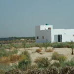 Nous savons que le Sud tunisien évoque souvent des images de dunes dorées, d’oasis verdoyantes, de levers de soleil ensorcelants et d’aventures inoubliables. C’est une région singulière, où les traditions ancestrales, les paysages contrastés et la simplicité de la vie créent une atmosphère envoûtante. Nous, qui avons souvent voyagé dans différentes contrées, trouvons ici un charme sans pareil. Cette escapade est bien plus qu’un simple voyage : c’est une plongée dans une autre dimension, une parenthèse hors du temps où l’on se sent comme invité dans un grand décor naturel, façonné au fil des siècles par la nature et par l’homme. Explorer la splendeur des oasis légendaires Les oasis du Sud tunisien agissent comme de véritables poumons dans cette immense mer de sable. Leur présence est un enchantement permanent : palmeraies luxuriantes, points d’eau clairs et accueillants, villages pittoresques aux ruelles calmes, marchés gorgés de senteurs épicées… Elles ressemblent à des petits mondes à part, nichés dans un environnement qui semble pourtant hostile. Parmi les plus connues, celles de Tozeur et Nefta s’imposent par leur beauté et leur sérénité. La lumière y est singulière, comme filtrée par un voile doré, offrant des contrastes de couleurs saisissants entre la verdure intense, le sable ocre et le ciel limpide. Nous sentons dans ces oasis une douceur de vivre palpable. Il suffit de s’asseoir à l’ombre d’un palmier, un verre de thé à la menthe à la main, pour ressentir une paix profonde. Ces lieux sont aussi connus pour leur artisanat local, leurs poteries délicatement façonnées, et pour l’hospitalité de leurs habitants. Chaque rencontre est une occasion de partager un moment de convivialité, d’échanger quelques mots, quelques sourires, et de comprendre la grande fierté qu’ils éprouvent pour leur terre. Plongée dans l'univers des déserts du Grand Erg Oriental Le Grand Erg Oriental est sans doute ce qui vient en premier à l’esprit quand on évoque le Sud tunisien. Cette vaste étendue de dunes changeantes, ces vagues de sable fin qui scintillent sous le soleil, forment un tableau majestueux. Nous avons souvent l’impression, en s’aventurant plus loin, de pénétrer dans le décor d’un film, où le temps semble suspendu. Une marche dans les dunes, pieds nus au contact d’un sable doux, est une expérience sensorielle unique. On y entend le souffle léger du vent, on y voit les ombres danser sur les pentes, on ressent la chaleur pénétrer chaque parcelle de notre peau. Les dunes dorées de Douz La petite ville de Douz, surnommée "la porte du désert", est un point de départ idéal pour explorer ces immensités. À Douz, nous apprécions l’animation du marché local, la douceur des dattes fraîchement cueillies, et l’ambiance fiévreuse des festivals de musique ou de courses de dromadaires. Dès que l’on quitte les ruelles, le désert se révèle dans toute sa splendeur. Les dunes, hautes et gracieuses, invitent à la contemplation. Chaque pas est un voyage, chaque regard est un spectacle. Nous aimons nous attarder jusqu’au coucher du soleil, lorsque le ciel s’embrase et que le désert se pare de nuances pourpres et orangées, comme une toile de maître. Balades à dos de dromadaire et randonnées inoubliables Les balades à dos de dromadaire sont une tradition incontournable. Ces animaux gracieux, parfaitement adaptés à la vie dans le désert, avancent sans se presser, offrant une manière douce de découvrir ces espaces. Nous nous laissons bercer par leur rythme, écoutons le silence, admirons l’horizon infini. Pour ceux qui préfèrent marcher, une randonnée guidée à travers le désert permet de mieux apprécier les détails : grains de sable qui scintillent, petits insectes qui s’agitent, présence discrète de plantes résistantes. Et pourquoi ne pas passer une nuit sous une tente, à la belle étoile ? Le firmament du Sahara est l’un des plus lumineux et des plus purs que nous ayons pu admirer. Le silence du désert, l’immensité de la voûte céleste, la fraîcheur de l’air nocturne : tout conspire à créer un souvenir impérissable. Les ksour et les villages troglodytes, témoins d’un passé fascinant Le Sud tunisien n’est pas seulement un désert de sable. C’est aussi une terre marquée par une longue histoire, que l’on retrouve dans la structure des ksour (ces anciens greniers fortifiés) et dans les villages troglodytes. Ici, l’architecture vernaculaire est en parfaite harmonie avec le paysage. Les constructions, souvent en terre crue, semblent prolonger naturellement les reliefs. Les ksour, avec leurs multiples cellules, témoignent d’une organisation communautaire ancestrale. Flâner entre ces murs est un voyage dans le temps, une manière de comprendre comment les peuples du Sud ont su s’adapter aux contraintes environnementales. Matmata et son architecture troglodyte Matmata est probablement le village troglodyte le plus connu. Ses habitations creusées dans la roche forment une sorte de réseau souterrain étonnant. On y découvre des pièces fraîches et confortables, protégées de la chaleur intense extérieure. Nous nous y sentons comme dans un cocon, un univers à part, presque irréel. Les lieux dégagent une atmosphère paisible. C’est en discutant avec les habitants que nous prenons la mesure de la sagesse et de l’adaptation dont ils ont fait preuve pour vivre dans un tel environnement. Le charme des villages berbères et des ksour perchés Plus loin, certains villages berbères, juchés sur des hauteurs, permettent d’admirer d’en haut l’immensité du désert. Ils offrent un panorama spectaculaire, surtout au lever du soleil. Les ksour, quant à eux, racontent une histoire de subsistance, d’échanges et de solidarité. Ils sont le reflet de modes de vie ingénieux, où chaque geste avait pour but de se fondre dans un milieu exigeant. Visiter ces sites, c’est rendre hommage à la créativité humaine et à sa capacité à transformer un espace aride en foyer. Déguster la richesse culinaire et profiter de l’hospitalité locale Le Sud tunisien est une terre de saveurs. Nous ne pouvons pas ignorer le rôle capital de la cuisine dans cette aventure. Les épices, les herbes, les dattes sucrées, la viande d’agneau parfumée, le pain cuit dans le sable… Autant d’éléments qui éveillent la curiosité et régalent le palais. Les plats traditionnels, préparés avec soin, reflètent l’identité profonde de la région. Les saveurs uniques du Sud tunisien Ici, goûter un couscous au fenouil sauvage, savourer un margoum, déguster un délicieux thé à la menthe ou croquer dans une datte fraîche cueillie au petit matin, c’est célébrer la générosité de cette terre. Les épices, souvent douces et subtiles, viennent relever des ingrédients simples. On adore la combinaison entre la fraîcheur d’une salade de tomates et de poivrons et le caractère généreux d’une viande légèrement épicée. Expériences culinaires authentiques Les marchés traditionnels regorgent de produits locaux. S’arrêter devant un étal de fruits secs, contempler les sacs de semoule, humer les épices colorées et faire quelques emplettes pour un pique-nique improvisé sont des moments simples qui rapprochent des habitants. Certains hébergements proposent même des ateliers culinaires, où nous pouvons apprendre à préparer un plat traditionnel et à maîtriser l’art du thé. Ces expériences participatives créent des liens, nourrissent notre curiosité et nous font mieux comprendre la culture locale. Planifier une aventure dans le Sud tunisien : conseils et astuces Le Sud tunisien n’est pas une destination qui s’improvise. Mieux vaut prendre le temps de construire un itinéraire qui nous correspond, en tenant compte de nos envies, de nos contraintes et de la saison. Pour une immersion réussie, nous pensons qu’il est utile de se renseigner sur les différents circuits et les prestations proposées par des professionnels locaux. Les guides expérimentés connaissent les moindres recoins du désert, les particularités de chaque oasis, et sont une précieuse source d’informations culturelles et historiques. Choisir des circuits organisés dans le désert Opter pour un circuit organisé dans le désert est souvent un bon choix, surtout si l’on souhaite bénéficier d’un encadrement rassurant et de conseils avisés. Certaines agences locales proposent des circuits sur mesure permettant de combiner la découverte des paysages, la rencontre avec les artisans, la dégustation de plats typiques et la participation à des ateliers traditionnels. Nous apprécions particulièrement la flexibilité de ces formules et la possibilité d’être accompagnés par des guides passionnés. Nous recommandons de consulter des professionnels reconnus et experts de la région. Pour organiser une expérience mémorable dans le désert, n’hésitez pas à visiter ce site pour circuits dans le désert. Vous trouverez une variété de propositions adaptées aux envies de chacun. Ces circuits permettent d’explorer des zones reculées, de goûter aux spécialités locales et de partager le quotidien des habitants, le tout en douceur. Conseils pratiques pour un séjour sans soucis Pour profiter pleinement de ce voyage, quelques conseils sont bienvenus. Le Sud tunisien est une région aux conditions parfois extrêmes, notamment en termes de chaleur. Nous recommandons de se munir de vêtements légers, longs et amples, d’un chapeau, de crème solaire et de lunettes de soleil. L’hydratation est essentielle, et mieux vaut boire régulièrement de petites gorgées d’eau. Du côté de la santé, avoir une trousse de premiers soins basique est toujours une bonne idée. Pensez également à vérifier la période de votre séjour : le printemps et l’automne sont généralement plus doux. Sur place, respectons les traditions et la vie locale. Il est toujours apprécié de demander la permission avant de photographier des personnes ou des lieux sensibles. Montrer de la courtoisie, prendre le temps de dialoguer, de négocier sur un marché, de saluer, de sourire : toutes ces petites attentions facilitent les échanges. Enfin, pour ceux qui souhaiteraient organiser un voyage personnalisé, une assistance locale ou un devis complet, rendez-vous sur ce lien de contact. Vous pourrez obtenir des informations précises, des conseils personnalisés et construire un séjour sur mesure selon vos goûts. Conclusion Le Sud tunisien est un univers à part, où chaque pas dans le désert, chaque rencontre, chaque dégustation est l’occasion de découvrir une facette insoupçonnée du pays. Les oasis ombragées, les dunes du Grand Erg Oriental, les villages troglodytes, les ksour fortifiés et la richesse de la cuisine locale composent un tableau d’une grande diversité. Nous avons le sentiment, en explorant cette région, de pénétrer un monde plus lent, plus authentique, où la nature dicte son rythme. Cette destination nous offre la possibilité de vivre des vacances intenses, profondément humaines, et d’ouvrir nos horizons. Découvrir le Sud tunisien, c’est plonger dans un récit millénaire, sentir l’âme du désert et comprendre que, derrière chaque grain de sable, se cache une histoire. Nous quittons cette terre avec des images gravées dans la mémoire, un nouveau regard sur la vie et l’envie irrésistible d’y revenir un jour, car un seul voyage ne semble jamais suffire.