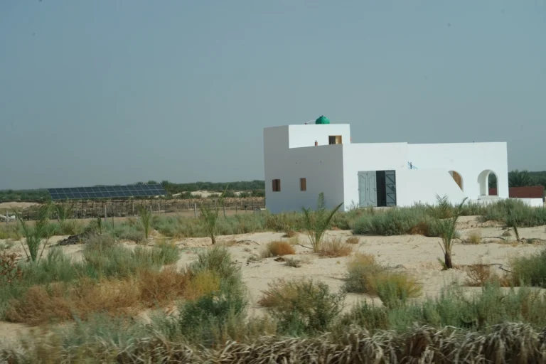 Nous savons que le Sud tunisien évoque souvent des images de dunes dorées, d’oasis verdoyantes, de levers de soleil ensorcelants et d’aventures inoubliables. C’est une région singulière, où les traditions ancestrales, les paysages contrastés et la simplicité de la vie créent une atmosphère envoûtante. Nous, qui avons souvent voyagé dans différentes contrées, trouvons ici un charme sans pareil. Cette escapade est bien plus qu’un simple voyage : c’est une plongée dans une autre dimension, une parenthèse hors du temps où l’on se sent comme invité dans un grand décor naturel, façonné au fil des siècles par la nature et par l’homme. Explorer la splendeur des oasis légendaires Les oasis du Sud tunisien agissent comme de véritables poumons dans cette immense mer de sable. Leur présence est un enchantement permanent : palmeraies luxuriantes, points d’eau clairs et accueillants, villages pittoresques aux ruelles calmes, marchés gorgés de senteurs épicées… Elles ressemblent à des petits mondes à part, nichés dans un environnement qui semble pourtant hostile. Parmi les plus connues, celles de Tozeur et Nefta s’imposent par leur beauté et leur sérénité. La lumière y est singulière, comme filtrée par un voile doré, offrant des contrastes de couleurs saisissants entre la verdure intense, le sable ocre et le ciel limpide. Nous sentons dans ces oasis une douceur de vivre palpable. Il suffit de s’asseoir à l’ombre d’un palmier, un verre de thé à la menthe à la main, pour ressentir une paix profonde. Ces lieux sont aussi connus pour leur artisanat local, leurs poteries délicatement façonnées, et pour l’hospitalité de leurs habitants. Chaque rencontre est une occasion de partager un moment de convivialité, d’échanger quelques mots, quelques sourires, et de comprendre la grande fierté qu’ils éprouvent pour leur terre. Plongée dans l'univers des déserts du Grand Erg Oriental Le Grand Erg Oriental est sans doute ce qui vient en premier à l’esprit quand on évoque le Sud tunisien. Cette vaste étendue de dunes changeantes, ces vagues de sable fin qui scintillent sous le soleil, forment un tableau majestueux. Nous avons souvent l’impression, en s’aventurant plus loin, de pénétrer dans le décor d’un film, où le temps semble suspendu. Une marche dans les dunes, pieds nus au contact d’un sable doux, est une expérience sensorielle unique. On y entend le souffle léger du vent, on y voit les ombres danser sur les pentes, on ressent la chaleur pénétrer chaque parcelle de notre peau. Les dunes dorées de Douz La petite ville de Douz, surnommée "la porte du désert", est un point de départ idéal pour explorer ces immensités. À Douz, nous apprécions l’animation du marché local, la douceur des dattes fraîchement cueillies, et l’ambiance fiévreuse des festivals de musique ou de courses de dromadaires. Dès que l’on quitte les ruelles, le désert se révèle dans toute sa splendeur. Les dunes, hautes et gracieuses, invitent à la contemplation. Chaque pas est un voyage, chaque regard est un spectacle. Nous aimons nous attarder jusqu’au coucher du soleil, lorsque le ciel s’embrase et que le désert se pare de nuances pourpres et orangées, comme une toile de maître. Balades à dos de dromadaire et randonnées inoubliables Les balades à dos de dromadaire sont une tradition incontournable. Ces animaux gracieux, parfaitement adaptés à la vie dans le désert, avancent sans se presser, offrant une manière douce de découvrir ces espaces. Nous nous laissons bercer par leur rythme, écoutons le silence, admirons l’horizon infini. Pour ceux qui préfèrent marcher, une randonnée guidée à travers le désert permet de mieux apprécier les détails : grains de sable qui scintillent, petits insectes qui s’agitent, présence discrète de plantes résistantes. Et pourquoi ne pas passer une nuit sous une tente, à la belle étoile ? Le firmament du Sahara est l’un des plus lumineux et des plus purs que nous ayons pu admirer. Le silence du désert, l’immensité de la voûte céleste, la fraîcheur de l’air nocturne : tout conspire à créer un souvenir impérissable. Les ksour et les villages troglodytes, témoins d’un passé fascinant Le Sud tunisien n’est pas seulement un désert de sable. C’est aussi une terre marquée par une longue histoire, que l’on retrouve dans la structure des ksour (ces anciens greniers fortifiés) et dans les villages troglodytes. Ici, l’architecture vernaculaire est en parfaite harmonie avec le paysage. Les constructions, souvent en terre crue, semblent prolonger naturellement les reliefs. Les ksour, avec leurs multiples cellules, témoignent d’une organisation communautaire ancestrale. Flâner entre ces murs est un voyage dans le temps, une manière de comprendre comment les peuples du Sud ont su s’adapter aux contraintes environnementales. Matmata et son architecture troglodyte Matmata est probablement le village troglodyte le plus connu. Ses habitations creusées dans la roche forment une sorte de réseau souterrain étonnant. On y découvre des pièces fraîches et confortables, protégées de la chaleur intense extérieure. Nous nous y sentons comme dans un cocon, un univers à part, presque irréel. Les lieux dégagent une atmosphère paisible. C’est en discutant avec les habitants que nous prenons la mesure de la sagesse et de l’adaptation dont ils ont fait preuve pour vivre dans un tel environnement. Le charme des villages berbères et des ksour perchés Plus loin, certains villages berbères, juchés sur des hauteurs, permettent d’admirer d’en haut l’immensité du désert. Ils offrent un panorama spectaculaire, surtout au lever du soleil. Les ksour, quant à eux, racontent une histoire de subsistance, d’échanges et de solidarité. Ils sont le reflet de modes de vie ingénieux, où chaque geste avait pour but de se fondre dans un milieu exigeant. Visiter ces sites, c’est rendre hommage à la créativité humaine et à sa capacité à transformer un espace aride en foyer. Déguster la richesse culinaire et profiter de l’hospitalité locale Le Sud tunisien est une terre de saveurs. Nous ne pouvons pas ignorer le rôle capital de la cuisine dans cette aventure. Les épices, les herbes, les dattes sucrées, la viande d’agneau parfumée, le pain cuit dans le sable… Autant d’éléments qui éveillent la curiosité et régalent le palais. Les plats traditionnels, préparés avec soin, reflètent l’identité profonde de la région. Les saveurs uniques du Sud tunisien Ici, goûter un couscous au fenouil sauvage, savourer un margoum, déguster un délicieux thé à la menthe ou croquer dans une datte fraîche cueillie au petit matin, c’est célébrer la générosité de cette terre. Les épices, souvent douces et subtiles, viennent relever des ingrédients simples. On adore la combinaison entre la fraîcheur d’une salade de tomates et de poivrons et le caractère généreux d’une viande légèrement épicée. Expériences culinaires authentiques Les marchés traditionnels regorgent de produits locaux. S’arrêter devant un étal de fruits secs, contempler les sacs de semoule, humer les épices colorées et faire quelques emplettes pour un pique-nique improvisé sont des moments simples qui rapprochent des habitants. Certains hébergements proposent même des ateliers culinaires, où nous pouvons apprendre à préparer un plat traditionnel et à maîtriser l’art du thé. Ces expériences participatives créent des liens, nourrissent notre curiosité et nous font mieux comprendre la culture locale. Planifier une aventure dans le Sud tunisien : conseils et astuces Le Sud tunisien n’est pas une destination qui s’improvise. Mieux vaut prendre le temps de construire un itinéraire qui nous correspond, en tenant compte de nos envies, de nos contraintes et de la saison. Pour une immersion réussie, nous pensons qu’il est utile de se renseigner sur les différents circuits et les prestations proposées par des professionnels locaux. Les guides expérimentés connaissent les moindres recoins du désert, les particularités de chaque oasis, et sont une précieuse source d’informations culturelles et historiques. Choisir des circuits organisés dans le désert Opter pour un circuit organisé dans le désert est souvent un bon choix, surtout si l’on souhaite bénéficier d’un encadrement rassurant et de conseils avisés. Certaines agences locales proposent des circuits sur mesure permettant de combiner la découverte des paysages, la rencontre avec les artisans, la dégustation de plats typiques et la participation à des ateliers traditionnels. Nous apprécions particulièrement la flexibilité de ces formules et la possibilité d’être accompagnés par des guides passionnés. Nous recommandons de consulter des professionnels reconnus et experts de la région. Pour organiser une expérience mémorable dans le désert, n’hésitez pas à visiter ce site pour circuits dans le désert. Vous trouverez une variété de propositions adaptées aux envies de chacun. Ces circuits permettent d’explorer des zones reculées, de goûter aux spécialités locales et de partager le quotidien des habitants, le tout en douceur. Conseils pratiques pour un séjour sans soucis Pour profiter pleinement de ce voyage, quelques conseils sont bienvenus. Le Sud tunisien est une région aux conditions parfois extrêmes, notamment en termes de chaleur. Nous recommandons de se munir de vêtements légers, longs et amples, d’un chapeau, de crème solaire et de lunettes de soleil. L’hydratation est essentielle, et mieux vaut boire régulièrement de petites gorgées d’eau. Du côté de la santé, avoir une trousse de premiers soins basique est toujours une bonne idée. Pensez également à vérifier la période de votre séjour : le printemps et l’automne sont généralement plus doux. Sur place, respectons les traditions et la vie locale. Il est toujours apprécié de demander la permission avant de photographier des personnes ou des lieux sensibles. Montrer de la courtoisie, prendre le temps de dialoguer, de négocier sur un marché, de saluer, de sourire : toutes ces petites attentions facilitent les échanges. Enfin, pour ceux qui souhaiteraient organiser un voyage personnalisé, une assistance locale ou un devis complet, rendez-vous sur ce lien de contact. Vous pourrez obtenir des informations précises, des conseils personnalisés et construire un séjour sur mesure selon vos goûts. Conclusion Le Sud tunisien est un univers à part, où chaque pas dans le désert, chaque rencontre, chaque dégustation est l’occasion de découvrir une facette insoupçonnée du pays. Les oasis ombragées, les dunes du Grand Erg Oriental, les villages troglodytes, les ksour fortifiés et la richesse de la cuisine locale composent un tableau d’une grande diversité. Nous avons le sentiment, en explorant cette région, de pénétrer un monde plus lent, plus authentique, où la nature dicte son rythme. Cette destination nous offre la possibilité de vivre des vacances intenses, profondément humaines, et d’ouvrir nos horizons. Découvrir le Sud tunisien, c’est plonger dans un récit millénaire, sentir l’âme du désert et comprendre que, derrière chaque grain de sable, se cache une histoire. Nous quittons cette terre avec des images gravées dans la mémoire, un nouveau regard sur la vie et l’envie irrésistible d’y revenir un jour, car un seul voyage ne semble jamais suffire.