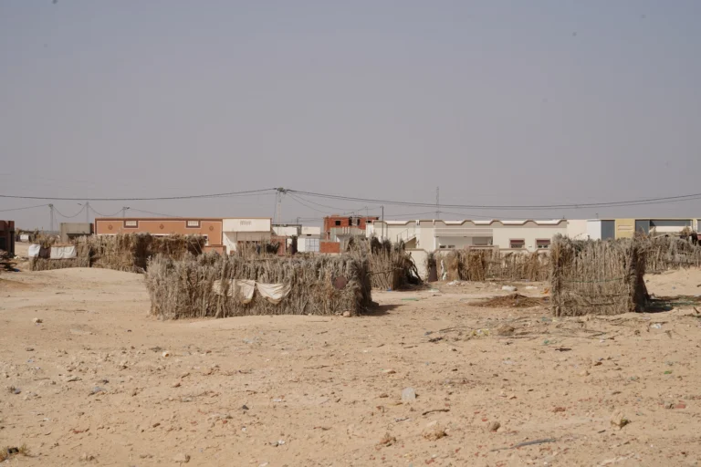 La Tunisie, un pays riche en histoire et en paysages diversifiés, est une destination idéale pour des vacances inoubliables. Si vous êtes à la recherche d'un circuit ou d'une excursion dans cette magnifique région, vous êtes au bon endroit. De la côte méditerranéenne aux paysages du désert du Sahara, la Tunisie offre une palette d'expériences adaptées à tous les types de voyageurs. Que vous soyez en quête d'aventure, de détente ou de découvertes culturelles, la Tunisie saura vous séduire. Découverte de la Tunisie à travers des circuits personnalisés Lorsqu'on parle de vacances en Tunisie, il est essentiel de mentionner l'importance des circuits organisés. Ces itinéraires permettent aux voyageurs de découvrir les sites emblématiques du pays tout en profitant du confort et de l'accompagnement de guides expérimentés. Parmi les circuits les plus populaires, on retrouve bien sûr la visite du Sahara tunisien, avec ses paysages époustouflants de dunes et de palmeraies. Les circuits incluent souvent des étapes incontournables telles que Douz, la porte du désert, ou encore Tozeur, une oasis d'une beauté rare. Pour ceux qui souhaitent explorer plus en profondeur, il existe des options sur mesure qui incluent des visites de sites historiques, des nuits sous les étoiles dans le désert, et même des balades à dos de chameau. Vous pouvez trouver des circuits sur https://sudtunisie.com/voyage/circuits-desert, qui vous offrent des itinéraires adaptés à vos envies, qu'il s'agisse d'une escapade courte ou d'une aventure prolongée à travers le sud tunisien. L'excursion dans le désert du Sahara tunisien L'une des expériences les plus fascinantes que vous pouvez vivre en Tunisie est l'excursion dans le désert du Sahara. Imaginez-vous au cœur de l'immensité désertique, entouré de dunes à perte de vue, respirant l'air pur et frais. Le désert tunisien n'est pas seulement un lieu de passage, mais un véritable havre de paix où vous pourrez vous ressourcer loin de l'agitation de la vie quotidienne. Les excursions dans le désert incluent généralement des nuitées en bivouac, offrant aux visiteurs l'opportunité de vivre comme les nomades. Vous pourrez profiter d'une soirée autour d'un feu de camp, écouter les récits des guides locaux et observer un ciel étoilé comme nulle part ailleurs. Ces excursions sont également l'occasion de découvrir des villages berbères, des sites historiques, comme les décors de films célèbres (comme "Star Wars"), et de rencontrer des habitants chaleureux et accueillants. Si vous êtes tenté par cette aventure unique, il vous suffit de demander un devis pour un circuit personnalisé via ce lien : Demander un devis pour votre excursion dans le désert. Les joyaux du sud tunisien : Matmata, Douz et Tozeur Matmata : À la découverte des habitations troglodytes Matmata, située dans le centre du pays, est une étape incontournable pour ceux qui souhaitent découvrir l'architecture traditionnelle tunisienne. Ce village est célèbre pour ses habitants troglodytes qui vivent dans des maisons creusées directement dans la roche. Un véritable voyage dans le temps vous attend, où vous pourrez explorer ces habitations étonnantes tout en apprenant sur la vie de ses habitants et leur mode de vie millénaire. En plus de son architecture unique, Matmata est également le lieu de tournage de certaines scènes du film "Star Wars". Les passionnés de cinéma y trouveront des sites fascinants à découvrir. Pour une expérience complète, une excursion guidée à Matmata peut être combinée avec d'autres visites, comme celle des dunes de Douz ou de l'oasis de Tozeur. Douz : La porte du désert et ses spectacles inoubliables Douz, surnommée la porte du désert, est un lieu magique où le désert rencontre la civilisation. Il s'agit d'un carrefour entre le monde nomade et les influences modernes. Vous pourrez y admirer de superbes dunes de sable, participer à des balades à dos de chameau et découvrir la culture berbère à travers des marchés typiques. Douz est également le point de départ de nombreuses excursions dans le Sahara, avec des options pour séjourner dans des bivouacs traditionnels et goûter à la cuisine locale tout en partageant des moments de convivialité avec les habitants. Lors du festival du Sahara qui se tient chaque année, vous pourrez assister à des spectacles fascinants de danse, de musique et de courses de chameaux, une véritable immersion dans la culture locale. Tozeur : Oasis et déserts sous un même ciel Tozeur est une oasis légendaire, connue pour ses palmeraies étendues et ses paysages désertiques spectaculaires. C'est l'endroit idéal pour découvrir la vie dans le désert tout en ayant accès à des infrastructures modernes. Ici, vous pourrez explorer des grottes de sel, faire des promenades à dos de chameau à travers les palmeraies et visiter les villages traditionnels. Tozeur est également le point de départ pour explorer les montagnes de l’Atlas et les oasis cachées de la région, telles que Chebika et Tamerza, deux sites emblématiques qui offrent des vues magnifiques sur la nature. Pour les amateurs de randonnée, ces montagnes sont un terrain de jeu idéal pour des excursions à pied. Activités incontournables lors de votre séjour en Tunisie Randonnée dans les montagnes et visites des oasis La Tunisie ne se résume pas uniquement à ses plages et son désert. Pour les amateurs de nature et de randonnées, le pays offre une variété de paysages impressionnants. Vous pouvez explorer les oasis montagneuses de Chebika et Tamerza, où la végétation luxuriante contraste avec les paysages arides du désert. Ces sites sont parfaits pour des randonnées douces et pour ceux qui cherchent à se reconnecter avec la nature. Excursions en 4x4 et balades en chameau Si vous préférez des aventures plus palpitantes, les excursions en 4x4 sont une excellente option pour explorer les régions les plus reculées de la Tunisie. Que ce soit dans le Sahara ou autour de l'oasis de Tozeur, ces balades sont parfaites pour découvrir des paysages à couper le souffle tout en profitant d'une expérience unique. Les balades en chameau sont également un excellent moyen de s'imprégner de la culture nomade et d'explorer le désert à son rythme. Visite des sites historiques et culturels La Tunisie possède une richesse historique impressionnante. Vous pouvez y visiter des sites antiques comme les ruines de Carthage, ou explorer les médinas de Tunis, Sousse et Kairouan. Ces visites permettent de découvrir l’histoire du pays, entre influences romaines, arabes et berbères, le tout dans un cadre souvent classé au patrimoine mondial de l’UNESCO. Réservez votre circuit ou excursion en Tunisie dès maintenant Que vous soyez en quête de détente, d’aventure ou de découvertes culturelles, la Tunisie est une destination idéale pour des vacances réussies. Avec ses circuits sur mesure et ses excursions inoubliables dans le désert et les montagnes, chaque voyage en Tunisie devient une expérience unique. Nous vous invitons à découvrir plus en détail nos circuits et à réserver votre excursion en Tunisie. Pour cela, n'hésitez pas à demander un devis personnalisé sur notre site. Un simple clic suffit pour commencer l'aventure : Demander un devis pour votre excursion dans le désert.