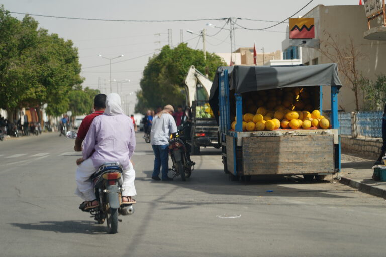 Le sud tunisien offre une évasion inégalée pour les voyageurs en quête d’aventures, de dépaysement et de découverte culturelle. Ce territoire, riche de paysages enchanteurs, de villages pittoresques et d’histoires millénaires, promet des souvenirs inoubliables. Nous vous présentons un guide complet pour un circuit vacances dans le sud tunisien, qui mêle relaxation, exploration et immersion culturelle. 1. Pourquoi Choisir le Sud Tunisien pour Vos Vacances ? Le sud tunisien est un véritable joyau, où se rencontrent nature sauvage, cultures authentiques et traditions ancestrales. Voici quelques raisons qui en font une destination de choix : Une diversité de paysages à couper le souffle : Des dunes dorées du Sahara à la mer scintillante de Djerba, en passant par les oasis verdoyantes de Chebika et Tamerza, chaque coin du sud tunisien raconte une histoire unique. Un patrimoine culturel riche : Tatouine et ses ksours (anciens greniers fortifiés), les villages berbères comme Matmata et ses habitations troglodytiques, ou encore les souks de Djerba regorgent de traditions vibrantes. Des activités variées pour tous les goûts : Que vous soyez amateur de randonnée, passionné d’histoire ou adepte de la détente, le sud tunisien a de quoi combler toutes vos attentes. Pour plus d’informations sur les circuits disponibles, consultez notre page dédiée ici. 2. Les Incontournables d'un Circuit dans le Sud Tunisien Djerba : L’île des Rêves Première étape incontournable de votre circuit, l’île de Djerba offre un parfait équilibre entre plages paradisiaques, art traditionnel et modernité. Promenez-vous dans Houmt Souk, le centre animé de l’île, et laissez-vous séduire par ses échoppes artisanales et ses cafés pittoresques. Activités phares à Djerba : Découvrir la synagogue de la Ghriba, un lieu spirituel et historique unique. Explorer Djerbahood, un village transformé en galerie à ciel ouvert par des artistes du monde entier. Se détendre sur les plages de Sidi Mahrez ou faire du kite-surf. Tatouine et ses Ksours Tatouine, située au cœur du désert, est connue pour ses ksours spectaculaires, témoins de l’ingéniosité des populations berbères. Ces anciennes constructions servaient autrefois de greniers collectifs. Points forts de Tatouine : Visiter Ksar Ouled Soltane, un des ksours les mieux conservés. Partir sur les traces de Star Wars, dont certaines scènes ont été tournées ici. Admirer le paysage à perte de vue, entre montagnes arides et vallées sablonneuses. Douz : La Porte du Sahara Surnommée la "Porte du Sahara", Douz est une destination rêve pour les amateurs de déserts et d’aventures. Cette ville est le point de départ idéal pour explorer les dunes majestueuses. Que faire à Douz ? Profiter d’une balade à dos de chameau au coucher du soleil. Passer une nuit sous une tente traditionnelle dans le désert, une expérience unique pour découvrir le calme absolu et le ciel étoilé. Participer au Festival International de Douz, qui célèbre la culture nomade chaque année. Les Oasis de Chebika et Tamerza Chebika et Tamerza, nichées au pied des montagnes de l’Atlas, sont des oasis d’une beauté exceptionnelle. Leur charme réside dans la juxtaposition d’étendues arides et de sources d’eau cristalline. Les points forts : Explorer les cascades de Tamerza, parfaites pour une pause rafraîchissante. Découvrir les ruines de l’ancien village de Chebika, un site historique fascinant. Parcourir les canyons et profiter d’une vue panoramique sur les environs. Matmata : Les Maisons Troglodytiques Matmata est célèbre pour ses habitations troglodytiques, des maisons creusées dans le sol pour échapper à la chaleur accablante du désert. Vous pourrez y découvrir un mode de vie unique et une architecture surprenante. Incontournables à Matmata : Visiter les maisons troglodytiques encore habitées. Découvrir le décor naturel où ont été tournés plusieurs films, notamment Star Wars. Goûter aux plats locaux comme le couscous ou les briks. 3. Conseils Pratiques pour Réussir Votre Circuit Quand Partir ? La meilleure période pour visiter le sud tunisien se situe entre octobre et avril. Pendant ces mois, les températures sont plus agréables, permettant de profiter pleinement des excursions et activités en plein air. Que Prévoir ? Des vêtements légers pour la journée, mais chauds pour les soirées souvent fraîches. Une paire de lunettes de soleil, un chapeau et une crème solaire pour vous protéger du soleil. Une bouteille d’eau réutilisable pour rester hydraté. Comment Se Déplacer ? Pour profiter pleinement de votre circuit, il est conseillé d’opter pour un guide local ou une agence spécialisée comme Sud Tunisie. Cela garantit une organisation optimale, une sécurité renforcée et une immersion totale dans la culture locale. 4. Vivez une Expérience Unique avec Sud Tunisie En choisissant de découvrir le sud tunisien avec une agence comme Sud Tunisie, vous bénéficierez d’un accompagnement personnalisé et de circuits sur mesure. Avec des guides passionnés et des itinéraires soigneusement planifiés, votre voyage deviendra une aventure inoubliable. Pourquoi choisir Sud Tunisie ? Des circuits adaptés à vos envies et votre budget. Une expertise locale pour des découvertes authentiques. Un souci du détail et une organisation sans faille. Pour réserver votre prochain circuit ou demander un devis personnalisé, visitez notre page de contact ici. Conclusion Le sud tunisien est une destination de rêve pour les voyageurs en quête d’aventures, d’horizons nouveaux et de souvenirs inoubliables. Que vous soyez attiré par les dunes du Sahara, les oasis luxuriantes ou les villages pittoresques, un circuit vacances dans cette région vous promet une expérience unique et enrichissante. N’attendez plus pour partir à la découverte de ce joyau tunisien et laissez-vous séduire par sa magie incomparable.