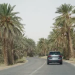 Le Sud Tunisien est un véritable paradis pour les amoureux de la nature, de l'aventure et de la culture. Avec ses paysages époustouflants, ses oasis secrètes et ses merveilles du désert, cette région vous invite à un voyage inoubliable. Si vous cherchez à découvrir un endroit unique, loin des sentiers battus, les vacances au Sud Tunisien vous offrent une expérience extraordinaire. Que vous soyez à la recherche de sensations fortes ou d'un havre de paix, le Sahara tunisien est la destination idéale. Dans cet article, nous allons vous faire découvrir les secrets de cette région et vous donner toutes les informations nécessaires pour organiser vos vacances. Le Sahara Tunisien : Un Désert aux Mille Facettes Le désert du Sahara est un lieu mythique qui fascine tous ceux qui ont la chance de le visiter. Le Sud Tunisien abrite une partie du Sahara, un vaste océan de sable parsemé d'oasis verdoyantes, de montagnes majestueuses et de ksour (villages traditionnels). Ce territoire est un véritable terrain de jeu pour les aventuriers et un refuge pour ceux qui recherchent la tranquillité. Lors de vos vacances, vous aurez l'occasion de découvrir des paysages à couper le souffle : dunes dorées à perte de vue, vastes étendues de sable, formations rocheuses impressionnantes et ciels étoilés d'une beauté sans pareil. Mais le Sahara ne se résume pas uniquement à son aspect minéral. Il regorge aussi de vie, avec des oasis où l'eau est précieuse, des villages traditionnels à visiter et des rencontres chaleureuses avec les habitants. Les Oasis et les Villages du Sud Tunisien : Un Voyage dans le Temps L'une des particularités du Sud Tunisien est la présence d'oasis qui parsèment le désert. Ces petites perles de verdure offrent un contraste frappant avec le paysage désertique. Elles sont souvent le point de départ pour explorer la région. Parmi les plus célèbres, on trouve Tozeur, une ville oasis incontournable, réputée pour ses palmeraies et son architecture unique en briques de terre. Tozeur est également la porte d'entrée vers le Chott el Jerid, un immense lac salé asséché qui s'étend sur des kilomètres, créant des paysages quasi lunaires. À proximité, vous pourrez découvrir le village berbère de Tamerza, niché au cœur de la montagne, où l'eau fraîche des cascades se mêle aux ruines des anciens ksour. Ces villages témoignent de l'histoire et de la culture des habitants du désert, qui ont su s'adapter à des conditions de vie extrêmes. Les Activités Incontournables au Sud Tunisien Le Sud Tunisien offre une multitude d'activités pour satisfaire tous les goûts. Que vous soyez amateur de sports extrêmes ou passionné d'histoire, vous trouverez toujours quelque chose à faire. 1. Randonnée dans le Désert L'une des expériences les plus mémorables à vivre dans le Sahara tunisien est la randonnée dans les dunes. Vous pouvez partir en excursion à dos de chameau, pour une immersion totale dans le désert, ou bien en 4x4 pour découvrir les merveilles naturelles cachées dans les recoins du désert. Cette aventure vous permettra d'admirer des panoramas spectaculaires et de vous sentir véritablement connecté à la nature. 2. Visite des Sites Historiques Le Sud Tunisien est également riche en histoire. Vous pourrez visiter des sites fascinants comme Matmata, célèbre pour ses maisons troglodytes creusées dans la roche, qui ont inspiré les décors de la saga Star Wars. Les Ksour de Tataouine, avec leurs architectures traditionnelles et leur ambiance intemporelle, vous offriront une plongée dans l'histoire et les traditions des habitants du désert. 3. Détente dans les Oases Pour ceux qui préfèrent la détente, les oasis du Sud Tunisien sont l'endroit idéal pour se ressourcer. Vous pourrez profiter de la fraîcheur de l'eau, vous baigner dans des piscines naturelles ou simplement vous prélasser sous les palmiers. Les villes comme Tozeur et Douz offrent des installations de qualité pour vous permettre de profiter pleinement de cette expérience. Les Circuits Désert : Découvrez le Sud à Votre Rythme Pour ceux qui souhaitent découvrir le Sud Tunisien de manière plus approfondie, nous proposons des circuits dans le désert. Ces circuits sont conçus pour vous offrir une immersion totale dans la région. Vous pourrez choisir entre différents types de séjours : des excursions d'une journée, des escapades de plusieurs jours, ou même des séjours de luxe avec nuitées dans des hôtels typiques ou des camps berbères. Les circuits dans le désert vous emmèneront à la découverte de lieux emblématiques comme Douz, la porte du désert, où vous pourrez découvrir la culture locale et assister à des festivals traditionnels. Vous explorerez aussi des sites insolites comme Chebika et Tamerza, deux oasis montagneuses où les paysages sont aussi beaux que surprenants. Pour plus d’informations, consultez notre page circuits désert. Des Vacances Pas Chères au Sud de la Tunisie Contrairement à ce que l’on pourrait penser, partir en vacances dans le Sud Tunisien ne nécessite pas un budget énorme. En effet, la région propose des options pour tous les budgets, que ce soit pour des hôtels économiques ou des séjours plus luxueux. En outre, la Tunisie reste une destination abordable en comparaison avec d'autres régions touristiques de la Méditerranée. Si vous cherchez à organiser un voyage pas cher, sachez que le Sud Tunisien offre de nombreuses options adaptées aux petits budgets. En optant pour un séjour dans le désert, vous pourrez profiter de l'hospitalité locale et de l'expérience authentique du désert sans vous ruiner. Si vous souhaitez organiser votre séjour, vous pouvez obtenir un devis personnalisé en cliquant sur ce lien demander un devis pour votre voyage dans le désert. Le Sud Tunisien : Une Destination Inoubliable En résumé, le Sud Tunisien est une destination incontournable pour ceux qui recherchent l’aventure, l’authenticité et la beauté des paysages désertiques. Que vous soyez passionné d’histoire, amoureux de la nature ou à la recherche de moments de détente, cette région saura répondre à toutes vos attentes. Profitez de votre voyage pour explorer les oasis, les villages traditionnels, les sites historiques et vivre des expériences uniques comme la randonnée à dos de chameau dans le Sahara. Les vacances au Sud Tunisien sont l'occasion idéale pour découvrir un monde fascinant et différent, loin du tumulte des grandes villes. Alors, qu'attendez-vous pour embarquer pour l'aventure et partir à la découverte du Sahara tunisien ?