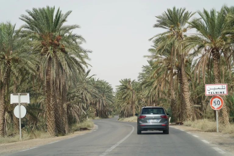 Le Sud Tunisien est un véritable paradis pour les amoureux de la nature, de l'aventure et de la culture. Avec ses paysages époustouflants, ses oasis secrètes et ses merveilles du désert, cette région vous invite à un voyage inoubliable. Si vous cherchez à découvrir un endroit unique, loin des sentiers battus, les vacances au Sud Tunisien vous offrent une expérience extraordinaire. Que vous soyez à la recherche de sensations fortes ou d'un havre de paix, le Sahara tunisien est la destination idéale. Dans cet article, nous allons vous faire découvrir les secrets de cette région et vous donner toutes les informations nécessaires pour organiser vos vacances. Le Sahara Tunisien : Un Désert aux Mille Facettes Le désert du Sahara est un lieu mythique qui fascine tous ceux qui ont la chance de le visiter. Le Sud Tunisien abrite une partie du Sahara, un vaste océan de sable parsemé d'oasis verdoyantes, de montagnes majestueuses et de ksour (villages traditionnels). Ce territoire est un véritable terrain de jeu pour les aventuriers et un refuge pour ceux qui recherchent la tranquillité. Lors de vos vacances, vous aurez l'occasion de découvrir des paysages à couper le souffle : dunes dorées à perte de vue, vastes étendues de sable, formations rocheuses impressionnantes et ciels étoilés d'une beauté sans pareil. Mais le Sahara ne se résume pas uniquement à son aspect minéral. Il regorge aussi de vie, avec des oasis où l'eau est précieuse, des villages traditionnels à visiter et des rencontres chaleureuses avec les habitants. Les Oasis et les Villages du Sud Tunisien : Un Voyage dans le Temps L'une des particularités du Sud Tunisien est la présence d'oasis qui parsèment le désert. Ces petites perles de verdure offrent un contraste frappant avec le paysage désertique. Elles sont souvent le point de départ pour explorer la région. Parmi les plus célèbres, on trouve Tozeur, une ville oasis incontournable, réputée pour ses palmeraies et son architecture unique en briques de terre. Tozeur est également la porte d'entrée vers le Chott el Jerid, un immense lac salé asséché qui s'étend sur des kilomètres, créant des paysages quasi lunaires. À proximité, vous pourrez découvrir le village berbère de Tamerza, niché au cœur de la montagne, où l'eau fraîche des cascades se mêle aux ruines des anciens ksour. Ces villages témoignent de l'histoire et de la culture des habitants du désert, qui ont su s'adapter à des conditions de vie extrêmes. Les Activités Incontournables au Sud Tunisien Le Sud Tunisien offre une multitude d'activités pour satisfaire tous les goûts. Que vous soyez amateur de sports extrêmes ou passionné d'histoire, vous trouverez toujours quelque chose à faire. 1. Randonnée dans le Désert L'une des expériences les plus mémorables à vivre dans le Sahara tunisien est la randonnée dans les dunes. Vous pouvez partir en excursion à dos de chameau, pour une immersion totale dans le désert, ou bien en 4x4 pour découvrir les merveilles naturelles cachées dans les recoins du désert. Cette aventure vous permettra d'admirer des panoramas spectaculaires et de vous sentir véritablement connecté à la nature. 2. Visite des Sites Historiques Le Sud Tunisien est également riche en histoire. Vous pourrez visiter des sites fascinants comme Matmata, célèbre pour ses maisons troglodytes creusées dans la roche, qui ont inspiré les décors de la saga Star Wars. Les Ksour de Tataouine, avec leurs architectures traditionnelles et leur ambiance intemporelle, vous offriront une plongée dans l'histoire et les traditions des habitants du désert. 3. Détente dans les Oases Pour ceux qui préfèrent la détente, les oasis du Sud Tunisien sont l'endroit idéal pour se ressourcer. Vous pourrez profiter de la fraîcheur de l'eau, vous baigner dans des piscines naturelles ou simplement vous prélasser sous les palmiers. Les villes comme Tozeur et Douz offrent des installations de qualité pour vous permettre de profiter pleinement de cette expérience. Les Circuits Désert : Découvrez le Sud à Votre Rythme Pour ceux qui souhaitent découvrir le Sud Tunisien de manière plus approfondie, nous proposons des circuits dans le désert. Ces circuits sont conçus pour vous offrir une immersion totale dans la région. Vous pourrez choisir entre différents types de séjours : des excursions d'une journée, des escapades de plusieurs jours, ou même des séjours de luxe avec nuitées dans des hôtels typiques ou des camps berbères. Les circuits dans le désert vous emmèneront à la découverte de lieux emblématiques comme Douz, la porte du désert, où vous pourrez découvrir la culture locale et assister à des festivals traditionnels. Vous explorerez aussi des sites insolites comme Chebika et Tamerza, deux oasis montagneuses où les paysages sont aussi beaux que surprenants. Pour plus d’informations, consultez notre page circuits désert. Des Vacances Pas Chères au Sud de la Tunisie Contrairement à ce que l’on pourrait penser, partir en vacances dans le Sud Tunisien ne nécessite pas un budget énorme. En effet, la région propose des options pour tous les budgets, que ce soit pour des hôtels économiques ou des séjours plus luxueux. En outre, la Tunisie reste une destination abordable en comparaison avec d'autres régions touristiques de la Méditerranée. Si vous cherchez à organiser un voyage pas cher, sachez que le Sud Tunisien offre de nombreuses options adaptées aux petits budgets. En optant pour un séjour dans le désert, vous pourrez profiter de l'hospitalité locale et de l'expérience authentique du désert sans vous ruiner. Si vous souhaitez organiser votre séjour, vous pouvez obtenir un devis personnalisé en cliquant sur ce lien demander un devis pour votre voyage dans le désert. Le Sud Tunisien : Une Destination Inoubliable En résumé, le Sud Tunisien est une destination incontournable pour ceux qui recherchent l’aventure, l’authenticité et la beauté des paysages désertiques. Que vous soyez passionné d’histoire, amoureux de la nature ou à la recherche de moments de détente, cette région saura répondre à toutes vos attentes. Profitez de votre voyage pour explorer les oasis, les villages traditionnels, les sites historiques et vivre des expériences uniques comme la randonnée à dos de chameau dans le Sahara. Les vacances au Sud Tunisien sont l'occasion idéale pour découvrir un monde fascinant et différent, loin du tumulte des grandes villes. Alors, qu'attendez-vous pour embarquer pour l'aventure et partir à la découverte du Sahara tunisien ?