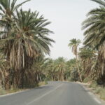 La Tunisie, joyau du Maghreb, offre une multitude de paysages époustouflants et d’expériences uniques pour les voyageurs en quête d’aventure et de détente. Parmi ses trésors, le Sahara Sud Tunisien se distingue par ses dunes dorées, ses oasis verdoyantes et sa richesse culturelle. Dans cet article, nous vous proposons de découvrir les meilleures circuits et excursions dans le Sahara Sud Tunisien, pour des vacances inoubliables au cœur de ce désert fascinant. Pourquoi Choisir le Sahara Sud Tunisien pour vos Vacances Le Sahara Sud Tunisien est une destination de choix pour de nombreuses raisons. Tout d'abord, son climat aride et ses vastes étendues de sable offrent un cadre parfait pour les amateurs de désert. Ensuite, la région est riche en patrimoine culturel, avec des villages berbères traditionnels et des sites archéologiques impressionnants. Enfin, la Tunisie propose une infrastructure touristique bien développée, garantissant confort et sécurité à ses visiteurs. Un Paysage Unique et Varié Le Sahara Sud Tunisien est réputé pour ses paysages à couper le souffle. Des dunes de sable majestueuses aux oasis luxuriantes, chaque coin de cette région offre une vue spectaculaire. Les couchers de soleil y sont particulièrement enchanteurs, peignant le ciel de teintes orangées et rouges. De plus, la diversité des paysages permet de pratiquer de nombreuses activités, comme le trekking, le quad ou encore les promenades à dos de chameau. Une Richesse Culturelle Inégalée La culture saharienne tunisienne est un véritable trésor à découvrir. Les habitants, principalement des tribus berbères, sont connus pour leur hospitalité légendaire et leurs traditions ancestrales. Lors de vos excursions, vous aurez l'occasion de visiter des ksour (villages fortifiés), de rencontrer les artisans locaux et d'assister à des spectacles de musique et de danse traditionnelles. Ces échanges culturels enrichissants vous permettront de mieux comprendre l’âme du Sahara Tunisien. Des Activités pour Tous les Goûts Que vous soyez amateur de sensations fortes ou en quête de tranquillité, le Sahara Sud Tunisien a quelque chose à offrir à chacun. Les aventuriers pourront s’adonner au sandboarding, à la randonnée dans les montagnes environnantes ou à l’exploration des grottes mystérieuses. Pour ceux qui préfèrent se détendre, de nombreuses oasis offrent des havres de paix où vous pourrez vous relaxer et profiter de la beauté naturelle environnante. Les Meilleurs Circuits pour Explorer le Sahara Sud Tunisien Pour profiter pleinement de votre séjour, il est essentiel de choisir un circuit bien organisé qui vous permettra de découvrir les incontournables de la région tout en vivant des expériences authentiques. Circuit Classique : Du Désert aux Oasis Ce circuit traditionnel vous emmène des vastes dunes du Sahara jusqu’aux oasis verdoyantes qui parsèment le paysage. Vous commencerez par une exploration des célèbres dunes de Douz, surnommée la "porte du désert", avant de vous aventurer vers les oasis de Kebili et de Tozeur. En chemin, vous découvrirez des villages pittoresques, des palmeraies luxuriantes et des sources d’eau cristalline. Ce parcours offre un bel équilibre entre aventures désertiques et moments de détente dans des cadres idylliques. Circuit Aventure : Randonnée et Exploration Pour les amateurs de sensations fortes, ce circuit est idéal. Il inclut des randonnées dans les montagnes de l’Aït Bou Hedid, des excursions en quad à travers les dunes et des descentes en buggy dans les vallées profondes. Vous aurez également l’opportunité de découvrir des sites archéologiques moins connus, offrant une perspective unique sur l’histoire de la région. Ce circuit est parfait pour ceux qui souhaitent explorer les aspects les plus sauvages et authentiques du Sahara Sud Tunisien. Circuit Culturel : Immersion dans les Traditions Sahariennes Ce circuit est conçu pour les passionnés de culture et d’histoire. Il inclut des visites de ksour traditionnels, des rencontres avec les artisans locaux et des ateliers de fabrication de tapis berbères. Vous pourrez également assister à des spectacles de musique et de danse traditionnelles, ainsi qu’à des cérémonies locales. Ce parcours permet de plonger au cœur de la vie saharienne et de mieux comprendre les coutumes et les traditions des habitants. Circuit Luxe : Confort et Raffinement dans le Désert Pour ceux qui recherchent une expérience plus luxueuse, ce circuit propose des hébergements haut de gamme dans des campements de luxe ou des hôtels cinq étoiles situés au bord des oasis. Vous profiterez de services personnalisés, de repas gastronomiques et d’activités exclusives telles que des dîners sous les étoiles et des excursions privées. Ce circuit est idéal pour ceux qui souhaitent allier aventure et confort lors de leur séjour dans le Sahara Sud Tunisien. Conseils Pratiques pour Préparer votre Voyage dans le Sahara Sud Tunisien Pour que votre séjour soit une réussite, il est important de bien préparer votre voyage. Voici quelques conseils pratiques pour vous aider à organiser vos vacances dans le Sahara Sud Tunisien. Meilleure Période pour Visiter La meilleure période pour visiter le Sahara Sud Tunisien se situe entre octobre et avril, lorsque les températures sont plus clémentes. En été, les températures peuvent être extrêmement élevées, rendant les activités en plein désert plus difficiles. Il est donc recommandé de planifier votre voyage en dehors de cette période pour profiter pleinement de votre séjour. Équipement Essentiel Préparez votre valise en fonction des conditions désertiques. Apportez des vêtements légers mais couvrants pour vous protéger du soleil, un chapeau, des lunettes de soleil, de la crème solaire et des chaussures confortables. N'oubliez pas également une bouteille d'eau réutilisable pour rester hydraté tout au long de la journée. Sécurité et Santé La sécurité dans le désert est primordiale. Assurez-vous de voyager avec un guide expérimenté qui connaît bien la région. Informez-vous sur les conditions météorologiques et les consignes de sécurité avant de partir. En cas de besoin, sachez où se trouvent les points de secours et les centres médicaux les plus proches. Réservation et Logistique Pour garantir un séjour sans encombre, il est conseillé de réserver vos circuits et hébergements à l'avance. De nombreux prestataires proposent des circuits désert adaptés à tous les budgets et à toutes les envies. Vous pouvez également obtenir un devis personnalisé en ligne via ce lien de contact. Expériences Inoubliables à Vivre dans le Sahara Sud Tunisien Un séjour dans le Sahara Sud Tunisien est une aventure riche en émotions et en découvertes. Voici quelques-unes des expériences les plus mémorables à ne pas manquer. Balades à dos de Chameau au Coucher du Soleil Une des façons les plus authentiques de découvrir le désert est de faire une balade à dos de chameau au coucher du soleil. Vous traverserez les dunes dorées tout en profitant des dernières lueurs du jour, créant des souvenirs inoubliables. Nuits Étoilées dans le Désert Le ciel du Sahara est d'une clarté exceptionnelle, offrant une vue imprenable sur les étoiles. Passer une nuit dans le désert, loin des lumières de la ville, est une expérience magique. Installez-vous autour d’un feu de camp, écoutez les histoires locales et contemplez le ciel étoilé. Visite des Sites Archéologiques de Dougga et Ksar Ghilane Les amateurs d’histoire apprécieront la visite des ruines de Dougga, un site archéologique classé au patrimoine mondial de l'UNESCO, ainsi que de Ksar Ghilane, un oasis célèbre pour ses thermes romains. Ces sites offrent un aperçu fascinant de l’histoire ancienne de la Tunisie et de ses influences. Rencontre avec les Artisans Locaux Découvrez l’artisanat saharien en rencontrant les artisans locaux. Participez à des ateliers de tissage, de poterie ou de fabrication de bijoux et repartez avec des souvenirs uniques, faits main par les habitants du désert. Conclusion : Une Aventure Inoubliable Vous Attend Le Sahara Sud Tunisien est une destination qui allie aventure, culture et détente, offrant une expérience unique et enrichissante. Que vous soyez un aventurier en quête de défis, un passionné de culture ou simplement à la recherche d’un lieu paisible pour vous ressourcer, cette région saura combler toutes vos attentes. N’attendez plus pour planifier vos vacances en Tunisie et embarquez pour un circuit ou une excursion dans le Sahara Sud Tunisien, une aventure qui restera gravée dans votre mémoire pour toujours. Pour plus d’informations et pour organiser votre voyage, n’hésitez pas à consulter notre site et à nous contacter via ce lien de contact.