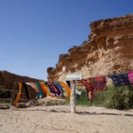 Vous rêvez de vacances uniques et d'une immersion totale dans la beauté sauvage du désert? Le Sahara tunisien est la destination idéale pour vivre une expérience authentique et mémorable. Que vous soyez amateur de randonnée, passionné de photographie ou simplement en quête de détente, le désert tunisien a tout pour vous séduire. Dans cet article, nous vous dévoilons pourquoi le Sahara en Tunisie est un choix parfait pour vos prochaines vacances et comment optimiser votre séjour pour en tirer le meilleur parti. Pourquoi Choisir le Sahara en Tunisie pour Vos Vacances? Le Sahara tunisien se distingue par ses paysages à couper le souffle et sa richesse culturelle. Contrairement à d'autres régions désertiques, le désert tunisien offre un mélange harmonieux entre tradition et modernité. Voici quelques raisons qui font du Sahara tunisien une destination de choix : Des Paysages Diversifiés et Spectaculaires Le Sahara en Tunisie présente une variété de paysages impressionnants, des dunes dorées aux rochers sculptés en passant par les oasis verdoyantes. Chaque coin du désert offre une nouvelle surprise, parfaite pour les amoureux de la nature et les aventuriers. Une Richesse Culturelle Inégalée Plongez dans l'histoire fascinante des nomades et découvrez les traditions ancestrales qui perdurent encore aujourd'hui. Les rencontres avec les habitants locaux enrichiront votre voyage et vous offriront un aperçu authentique de la vie dans le désert. Activités Variées pour Tous les Goûts Que vous souhaitiez faire du 4x4, de la randonnée à dos de chameau, ou simplement admirer le coucher de soleil sur les dunes, le Sahara tunisien propose une multitude d'activités adaptées à tous les niveaux et à toutes les envies. Les Meilleures Activités à Faire dans le Désert Tunisien Le désert tunisien est un terrain de jeu idéal pour les amateurs d'aventure et de découverte. Voici quelques-unes des activités incontournables à inclure dans votre programme de vacances : Randonnée et Trekking Partez à la découverte des sentiers désertiques et laissez-vous émerveiller par la beauté brute du Sahara. Des itinéraires pour tous les niveaux vous permettent de profiter pleinement de la nature tout en relevant des défis personnels. Balades à Dos de Chameau Vivez une expérience authentique en traversant les dunes à dos de chameau. Cette activité traditionnelle vous permet de ralentir le rythme et d'apprécier le paysage à votre propre rythme. Camping Sous les Étoiles Passez une nuit inoubliable sous le ciel étoilé du Sahara. Les camps de désert offrent des hébergements confortables tout en vous plongeant dans une atmosphère magique et paisible. Visites des Villages Nomades Rencontrez les habitants des villages nomades et découvrez leur mode de vie unique. Ces visites vous offriront une perspective enrichissante sur la culture et les traditions locales. Sports de Désert Pour les plus aventureux, des activités comme le sandboard ou le quad sont disponibles pour ajouter une dose d'adrénaline à votre séjour. Conseils Pratiques pour Organiser Votre Séjour dans le Sahara Tunisien Pour profiter pleinement de votre aventure dans le désert tunisien, quelques préparatifs sont nécessaires. Voici nos conseils pour un voyage réussi : Meilleure Période pour Visiter Le climat dans le Sahara peut être extrême, avec des températures élevées en été et très froides en hiver. La période idéale pour visiter se situe au printemps et en automne, lorsque le climat est plus clément. Préparation Physique Certaines activités, comme la randonnée ou le trekking, peuvent être exigeantes physiquement. Il est recommandé de préparer votre corps avant le voyage pour éviter les mauvaises surprises. Équipement Essentiel Assurez-vous d'emporter des vêtements adaptés aux conditions désertiques, incluant des vêtements légers pour la journée et des couches chaudes pour la nuit. N'oubliez pas la crème solaire, un chapeau, des lunettes de soleil et des chaussures confortables. Hydratation et Alimentation Le désert est un environnement aride où la déshydratation peut survenir rapidement. Emportez suffisamment d'eau et des encas énergétiques pour rester hydraté et alimenté tout au long de votre excursion. Sécurité et Respect de l'Environnement Respectez les consignes de sécurité et veillez à ne pas perturber l'écosystème fragile du désert. Suivez les indications de votre guide et adoptez un comportement responsable pour préserver cette magnifique région. Découvrez les Circuits Incontournables du Désert Tunisien Pour une expérience complète et bien organisée, optez pour des circuits touristiques spécialement conçus pour explorer les merveilles du Sahara tunisien. Découvrez nos circuits qui vous emmèneront à travers les paysages époustouflants et les sites emblématiques du désert. Que vous souhaitiez une aventure en solitaire ou un séjour en groupe, nos circuits offrent des options adaptées à tous les voyageurs. Circuit Découverte Idéal pour les premières visites, ce circuit vous permet de découvrir les principales attractions du désert tunisien, incluant des arrêts dans des oasis pittoresques et des villages traditionnels. Circuit Aventure Pour les amateurs de sensations fortes, ce circuit propose des activités plus intenses comme le quad, le sandboard et des randonnées sur des terrains variés. Circuit Culturel Plongez dans l'histoire et la culture locale avec des visites guidées des sites historiques, des rencontres avec les habitants et des ateliers artisanaux. Circuit Luxe Si vous recherchez le confort, ce circuit vous offre des hébergements haut de gamme, des repas gastronomiques et des services personnalisés pour un séjour inoubliable. Pourquoi Choisir Sud Tunisie pour Votre Voyage dans le Sahara Organiser un voyage dans le désert peut sembler complexe, mais avec l'aide de Sud Tunisie, tout devient simple et agréable. Nous vous proposons des voyages sur mesure, adaptés à vos envies et à votre budget. Notre équipe expérimentée veille à chaque détail pour que vous puissiez profiter pleinement de votre séjour sans soucis. Expertise et Expérience Avec des années d'expérience dans le tourisme saharien, nous connaissons les meilleures routes, les sites incontournables et les secrets pour rendre votre voyage exceptionnel. Hébergements de Qualité Nous collaborons avec des hôtels et des camps de désert de premier choix, garantissant confort et authenticité tout au long de votre séjour. Guides Locaux Professionnels Nos guides sont des experts locaux passionnés, prêts à partager leur connaissance et à vous faire découvrir les trésors cachés du désert tunisien. Flexibilité et Personnalisation Que vous souhaitiez un séjour actif ou reposant, nous adaptons nos circuits à vos préférences pour une expérience personnalisée et mémorable. Planifiez Votre Voyage dès Aujourd'hui Ne laissez pas passer l'opportunité de vivre une aventure exceptionnelle dans le Sahara tunisien. Que ce soit pour une escapade romantique, des vacances en famille ou une aventure entre amis, nous avons la solution parfaite pour vous. Contactez-nous dès maintenant pour obtenir un devis personnalisé et commencer à planifier le voyage de vos rêves. Conclusion Le Sahara tunisien est bien plus qu'une simple destination touristique; c'est une invitation à explorer, à découvrir et à se reconnecter avec la nature et les cultures ancestrales. Avec des paysages à couper le souffle, une riche histoire et une multitude d'activités, vos vacances dans le désert tunisien seront sans aucun doute inoubliables. Faites confiance à Sud Tunisie pour organiser un séjour sur mesure qui répondra à toutes vos attentes et vous permettra de vivre une expérience unique au cœur du Sahara.