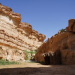 Le Sud tunisien est un véritable paradis pour les voyageurs à la recherche d’une expérience unique alliant aventure, culture et paysages à couper le souffle. Si vous êtes passionné par l'histoire ancienne, les paysages désertiques époustouflants, et l’authenticité des traditions tunisiennes, un circuit vacances sud tunisien est exactement ce qu'il vous faut. Découvrez avec nous les incontournables de cette région fascinante, et pourquoi un voyage dans le désert tunisien devrait être sur votre liste des destinations à explorer. Un voyage au cœur du Sahara tunisien : Des paysages qui émerveillent Le Sahara tunisien est bien plus qu'un désert. Il est une vaste étendue de sable doré, de montagnes majestueuses et de paysages naturels qui semblent tout droit sortis d’un rêve. Ce désert est une invitation à la contemplation, mais aussi à l’aventure. Dès que vous arrivez, vous serez accueilli par un spectacle à couper le souffle : des dunes à perte de vue, une lumière dorée qui change constamment selon l’heure de la journée, et des oasis qui apportent une touche de fraîcheur à ce paysage aride. Les circuits dans le sud tunisien permettent aux voyageurs de s’enfoncer profondément dans le Sahara, où ils découvriront des paysages variés allant des oasis aux formations rocheuses impressionnantes. C’est une chance unique d’explorer ce désert magique à travers des excursions organisées qui vous permettront de vivre une expérience authentique. Les lieux immanquables lors de votre excursion dans le sud tunisien Lors de votre voyage dans le sud tunisien, plusieurs étapes incontournables feront de votre circuit désert tunisien un souvenir mémorable. Voici quelques-uns des lieux les plus fascinants à visiter : Douz : La porte du désert Douz, surnommée la "porte du désert", est l'une des étapes incontournables de tout circuit dans le sud de la Tunisie. C’est ici que le Sahara commence véritablement. Vous pourrez découvrir l'authenticité de la ville en vous promenant dans les ruelles animées du marché, mais aussi profiter d’une balade à dos de chameau à travers les dunes de sable. Douz est également réputée pour son festival international du désert, un événement annuel qui attire des visiteurs du monde entier. Si vous avez la chance d’y assister, vous pourrez profiter de nombreuses activités traditionnelles, des courses de chameaux aux danses folkloriques. Matmata : Le village troglodyte Matmata est un autre joyau du sud tunisien. Ce village est célèbre pour ses habitations troglodytes, c’est-à-dire des maisons creusées dans la terre. Ces habitations sont fraîches, confortables et parfaitement adaptées aux conditions climatiques du désert. En visitant Matmata, vous découvrirez une façon de vivre unique, totalement en harmonie avec l'environnement naturel. Les visiteurs de Matmata peuvent aussi découvrir l'histoire du village, ses traditions et ses coutumes, tout en admirant un paysage à couper le souffle. Ce lieu est également connu pour avoir servi de décor au film Star Wars, ce qui en fait une étape incontournable pour les cinéphiles. Tozeur : La perle du sud tunisien Tozeur est une autre étape clé lors de votre voyage dans le sud tunisien. Connue pour ses palmeraies impressionnantes et ses oasis verdoyantes, la ville de Tozeur vous offre un cadre exceptionnel pour une pause reposante après une journée de découvertes dans le désert. Tozeur est aussi célèbre pour ses architectures en briques de terre, qui témoignent de l’ingéniosité des habitants dans la construction de leurs maisons. Vous pourrez aussi y explorer le musée Dar Chraïet, qui abrite une collection fascinante d’objets traditionnels et d'artéfacts datant de l’époque romaine et plus ancienne encore. Une aventure à vivre : Les excursions dans le désert et ses activités L’une des principales raisons pour lesquelles les voyageurs viennent dans le sud tunisien est de vivre une aventure dans le désert. Voici quelques-unes des activités les plus populaires à ne pas manquer lors de votre excursion désert sud tunisien. Randonnée dans les dunes Se perdre dans les dunes du Sahara tunisien est une expérience inoubliable. Lors de votre excursion, vous aurez l'occasion de partir à la découverte de ces montagnes de sable à pied ou en 4x4. En fonction de votre itinéraire, vous pourrez explorer les paysages désertiques en toute tranquillité, vous imprégner de la beauté des lieux et profiter de moments de calme absolu. Balade à dos de chameau Une balade à dos de chameau est une activité emblématique lors de tout circuit dans le sud tunisien. Ces majestueux animaux vous guideront à travers les dunes et vous offriront une perspective unique du désert. La balade à dos de chameau vous permet de découvrir le désert à un rythme lent, tout en appréciant pleinement le silence et la beauté environnante. Nuit à la belle étoile dans le désert Que serait une excursion dans le désert tunisien sans passer une nuit sous un ciel étoilé ? Passer la nuit dans un campement dans le désert, en plein cœur du Sahara, est une expérience unique. Après une journée d’aventures, vous serez accueilli dans un campement traditionnel où vous pourrez profiter d’un dîner à base de plats locaux. Le soir venu, allongez-vous sous les étoiles et laissez-vous éblouir par la pureté du ciel nocturne. Les avantages d’un circuit dans le sud tunisien Plongée dans une culture authentique En plus de ses paysages magnifiques, le sud tunisien offre une immersion totale dans la culture locale. Que vous vous promeniez dans les marchés de Douz ou que vous découvriez les traditions des habitants de Matmata, chaque étape de votre circuit est une occasion d’en apprendre davantage sur la vie traditionnelle tunisienne. Vous pourrez goûter à des spécialités locales, comme le couscous au mouton ou les dates de Tozeur, qui sont réputées dans toute la région. Accessibilité et flexibilité Contrairement à d’autres destinations désertiques, le désert tunisien est facilement accessible depuis plusieurs grandes villes comme Tunis ou Sfax. De plus, vous avez la possibilité de personnaliser votre circuit en fonction de vos envies. Que vous soyez à la recherche d’une expérience tranquille ou d’une aventure plus intense, vous trouverez forcément un itinéraire qui correspond à vos attentes. Prêt pour l’aventure ? Réservez votre circuit dans le sud tunisien ! Le sud tunisien est une destination qui a tout pour plaire : des paysages à couper le souffle, des activités inoubliables, et une immersion dans une culture authentique. Si vous êtes prêt à vivre l’aventure, n’attendez plus pour réserver votre excursion dans le désert tunisien. Pour plus de détails et pour réserver votre circuit, rendez-vous sur SudTunisie.com. Si vous avez des questions ou souhaitez obtenir un devis personnalisé, n'hésitez pas à nous contacter via ce lien : Devis voyage désert Sud Tunisie. N'attendez plus pour explorer l'un des déserts les plus majestueux du monde !