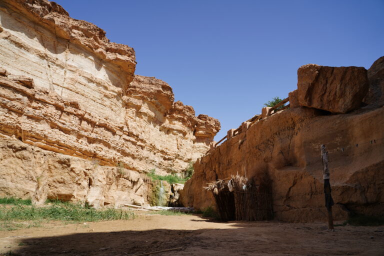 Le Sud tunisien est un véritable paradis pour les voyageurs à la recherche d’une expérience unique alliant aventure, culture et paysages à couper le souffle. Si vous êtes passionné par l'histoire ancienne, les paysages désertiques époustouflants, et l’authenticité des traditions tunisiennes, un circuit vacances sud tunisien est exactement ce qu'il vous faut. Découvrez avec nous les incontournables de cette région fascinante, et pourquoi un voyage dans le désert tunisien devrait être sur votre liste des destinations à explorer. Un voyage au cœur du Sahara tunisien : Des paysages qui émerveillent Le Sahara tunisien est bien plus qu'un désert. Il est une vaste étendue de sable doré, de montagnes majestueuses et de paysages naturels qui semblent tout droit sortis d’un rêve. Ce désert est une invitation à la contemplation, mais aussi à l’aventure. Dès que vous arrivez, vous serez accueilli par un spectacle à couper le souffle : des dunes à perte de vue, une lumière dorée qui change constamment selon l’heure de la journée, et des oasis qui apportent une touche de fraîcheur à ce paysage aride. Les circuits dans le sud tunisien permettent aux voyageurs de s’enfoncer profondément dans le Sahara, où ils découvriront des paysages variés allant des oasis aux formations rocheuses impressionnantes. C’est une chance unique d’explorer ce désert magique à travers des excursions organisées qui vous permettront de vivre une expérience authentique. Les lieux immanquables lors de votre excursion dans le sud tunisien Lors de votre voyage dans le sud tunisien, plusieurs étapes incontournables feront de votre circuit désert tunisien un souvenir mémorable. Voici quelques-uns des lieux les plus fascinants à visiter : Douz : La porte du désert Douz, surnommée la "porte du désert", est l'une des étapes incontournables de tout circuit dans le sud de la Tunisie. C’est ici que le Sahara commence véritablement. Vous pourrez découvrir l'authenticité de la ville en vous promenant dans les ruelles animées du marché, mais aussi profiter d’une balade à dos de chameau à travers les dunes de sable. Douz est également réputée pour son festival international du désert, un événement annuel qui attire des visiteurs du monde entier. Si vous avez la chance d’y assister, vous pourrez profiter de nombreuses activités traditionnelles, des courses de chameaux aux danses folkloriques. Matmata : Le village troglodyte Matmata est un autre joyau du sud tunisien. Ce village est célèbre pour ses habitations troglodytes, c’est-à-dire des maisons creusées dans la terre. Ces habitations sont fraîches, confortables et parfaitement adaptées aux conditions climatiques du désert. En visitant Matmata, vous découvrirez une façon de vivre unique, totalement en harmonie avec l'environnement naturel. Les visiteurs de Matmata peuvent aussi découvrir l'histoire du village, ses traditions et ses coutumes, tout en admirant un paysage à couper le souffle. Ce lieu est également connu pour avoir servi de décor au film Star Wars, ce qui en fait une étape incontournable pour les cinéphiles. Tozeur : La perle du sud tunisien Tozeur est une autre étape clé lors de votre voyage dans le sud tunisien. Connue pour ses palmeraies impressionnantes et ses oasis verdoyantes, la ville de Tozeur vous offre un cadre exceptionnel pour une pause reposante après une journée de découvertes dans le désert. Tozeur est aussi célèbre pour ses architectures en briques de terre, qui témoignent de l’ingéniosité des habitants dans la construction de leurs maisons. Vous pourrez aussi y explorer le musée Dar Chraïet, qui abrite une collection fascinante d’objets traditionnels et d'artéfacts datant de l’époque romaine et plus ancienne encore. Une aventure à vivre : Les excursions dans le désert et ses activités L’une des principales raisons pour lesquelles les voyageurs viennent dans le sud tunisien est de vivre une aventure dans le désert. Voici quelques-unes des activités les plus populaires à ne pas manquer lors de votre excursion désert sud tunisien. Randonnée dans les dunes Se perdre dans les dunes du Sahara tunisien est une expérience inoubliable. Lors de votre excursion, vous aurez l'occasion de partir à la découverte de ces montagnes de sable à pied ou en 4x4. En fonction de votre itinéraire, vous pourrez explorer les paysages désertiques en toute tranquillité, vous imprégner de la beauté des lieux et profiter de moments de calme absolu. Balade à dos de chameau Une balade à dos de chameau est une activité emblématique lors de tout circuit dans le sud tunisien. Ces majestueux animaux vous guideront à travers les dunes et vous offriront une perspective unique du désert. La balade à dos de chameau vous permet de découvrir le désert à un rythme lent, tout en appréciant pleinement le silence et la beauté environnante. Nuit à la belle étoile dans le désert Que serait une excursion dans le désert tunisien sans passer une nuit sous un ciel étoilé ? Passer la nuit dans un campement dans le désert, en plein cœur du Sahara, est une expérience unique. Après une journée d’aventures, vous serez accueilli dans un campement traditionnel où vous pourrez profiter d’un dîner à base de plats locaux. Le soir venu, allongez-vous sous les étoiles et laissez-vous éblouir par la pureté du ciel nocturne. Les avantages d’un circuit dans le sud tunisien Plongée dans une culture authentique En plus de ses paysages magnifiques, le sud tunisien offre une immersion totale dans la culture locale. Que vous vous promeniez dans les marchés de Douz ou que vous découvriez les traditions des habitants de Matmata, chaque étape de votre circuit est une occasion d’en apprendre davantage sur la vie traditionnelle tunisienne. Vous pourrez goûter à des spécialités locales, comme le couscous au mouton ou les dates de Tozeur, qui sont réputées dans toute la région. Accessibilité et flexibilité Contrairement à d’autres destinations désertiques, le désert tunisien est facilement accessible depuis plusieurs grandes villes comme Tunis ou Sfax. De plus, vous avez la possibilité de personnaliser votre circuit en fonction de vos envies. Que vous soyez à la recherche d’une expérience tranquille ou d’une aventure plus intense, vous trouverez forcément un itinéraire qui correspond à vos attentes. Prêt pour l’aventure ? Réservez votre circuit dans le sud tunisien ! Le sud tunisien est une destination qui a tout pour plaire : des paysages à couper le souffle, des activités inoubliables, et une immersion dans une culture authentique. Si vous êtes prêt à vivre l’aventure, n’attendez plus pour réserver votre excursion dans le désert tunisien. Pour plus de détails et pour réserver votre circuit, rendez-vous sur SudTunisie.com. Si vous avez des questions ou souhaitez obtenir un devis personnalisé, n'hésitez pas à nous contacter via ce lien : Devis voyage désert Sud Tunisie. N'attendez plus pour explorer l'un des déserts les plus majestueux du monde !