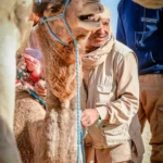 La Tunisie, un pays de contrastes et de découvertes, regorge de paysages époustouflants et de lieux historiques à couper le souffle. Parmi les trésors les plus fascinants, le Sud Tunisien se distingue par ses étendues désertiques, ses oasis luxuriantes et ses sites culturels uniques. Que vous ayez 2, 3 ou 4 jours devant vous, un circuit dans le Sud Tunisien vous promet une aventure inoubliable. Dans cet article, nous vous présentons plusieurs options pour explorer cette région magique, en fonction de vos préférences et du temps dont vous disposez. Pourquoi Choisir un Circuit dans le Sud Tunisien ? Le Sud Tunisien est une destination de choix pour ceux qui cherchent à vivre une expérience authentique. C’est une région où le désert règne en maître, où les montagnes côtoient les oasis verdoyantes et où chaque coin recèle une histoire millénaire. Voici quelques raisons pour lesquelles un circuit dans le Sud Tunisien devrait figurer en tête de votre liste de voyages. 1. Un Voyage au Cœur du Désert Si vous rêvez de vivre une expérience dans l’immensité du Sahara, un circuit dans le Sud Tunisien est une occasion rêvée. Imaginez-vous traverser les dunes dorées, rencontrer des nomades et passer une nuit sous un ciel étoilé, loin de toute pollution lumineuse. Le Sahara tunisien, avec ses paysages à couper le souffle, vous offrira une aventure hors du commun. 2. Une Richesse Culturelle Unique Le Sud de la Tunisie est un véritable berceau de l’histoire et de la culture. Vous aurez l’occasion de visiter des villages troglodytes à Matmata, des ksour (forteresses berbères) à Tataouine, ou encore des sites antiques comme Dougga. Chaque étape de votre circuit vous permettra de vous imprégner de la culture locale et de découvrir des traditions ancestrales. 3. Un Séjour Relaxant et Inoubliable Bien que le Sud soit un lieu de découverte, il est aussi un endroit où l’on peut se détendre. Les oasis et les villages comme Tozeur ou Douz vous invitent à vous reposer au milieu de palmeraies luxuriantes. Vous pourrez profiter des bienfaits des sources d’eau thermale ou d’un bain de soleil au cœur de paysages exceptionnels. Les Différentes Durées de Circuit dans le Sud Tunisien Que vous disposiez de 2 jours, 3 jours ou même 4 jours, chaque circuit est une occasion unique de découvrir la richesse du Sud Tunisien. Voici quelques suggestions selon le temps que vous avez à disposition. 1. Circuit Sud Tunisien 2 Jours : Découverte Express du Désert Si vous n'avez que 2 jours pour explorer le Sud Tunisien, il est essentiel de bien choisir vos étapes. Un circuit express vous permettra de découvrir les incontournables sans trop de déplacements. Jour 1 : Arrivée à Douz, la porte du désert. Vous commencerez par une balade à dos de chameau pour explorer les dunes du Sahara. L’après-midi, direction Matmata pour découvrir les célèbres maisons troglodytes. Jour 2 : Le matin, visite de Tataouine et ses ksour, puis route vers Tozeur pour découvrir les oasis et la lagune de Chott el Jerid. Retour en fin de journée. Ce circuit est idéal pour ceux qui disposent de peu de temps mais souhaitent tout de même avoir un aperçu de la beauté et de l’authenticité du Sud Tunisien. 2. Circuit Sud Tunisien 3 Jours : Une Immersion Plus Profonde Pour ceux qui souhaitent passer un peu plus de temps dans cette région magique, un circuit de 3 jours permet une immersion plus profonde tout en restant accessible. Jour 1 : Arrivée à Douz, balade à dos de chameau dans les dunes. L'après-midi, départ pour Matmata et visite des maisons troglodytes, avec une nuit dans un hôtel local. Jour 2 : Route vers Tataouine pour explorer les ksour, puis départ pour Ksar Ouled Soltane. Dans l'après-midi, visite de Tozeur et ses oasis. Jour 3 : Excursion vers les oasis de montagne de Chebika et Tamerza, avant de terminer votre voyage par une découverte de la lagune de Chott el Jerid. Avec ce circuit de 3 jours, vous pourrez voir un large éventail de paysages, d’architectures et de traditions, tout en profitant de la tranquillité du désert. 3. Circuit Sud Tunisien 4 Jours : L'Aventure Complète Un circuit de 4 jours vous permet de plonger encore plus profondément dans la magie du Sud. Vous aurez l’opportunité de découvrir des sites plus reculés et de vivre une expérience véritablement immersive. Jour 1 : Arrivée à Douz et balade à dos de chameau dans le désert. Visite de Matmata et nuit dans un hôtel troglodyte. Jour 2 : Exploration des ksour de Tataouine et découverte des paysages uniques de Ksar Ouled Soltane. L'après-midi, visite de Tozeur. Jour 3 : Excursion dans les oasis de Chebika et Tamerza, baignade dans les piscines naturelles et exploration de la vallée de l'Eloued. Jour 4 : Exploration de Chott el Jerid, une vaste lagune salée, puis retour vers votre point de départ. Ce circuit est parfait pour ceux qui souhaitent découvrir les plus beaux sites du Sud Tunisien tout en profitant de l'authenticité et de la tranquillité du désert. Circuit Sud Tunisien : Excursions Organisées et Réservation Facile Si vous préférez voyager sans avoir à organiser chaque détail de votre voyage, des excursions organisées en Tunisie sont disponibles. Ces circuits vous permettent de profiter d’une expérience fluide et sans souci, avec des transports, des guides et des activités déjà prévus pour vous. Nous vous recommandons de réserver votre circuit via Sud Tunisie, où vous trouverez des options variées pour toutes les durées et préférences. Les circuits sont conçus pour offrir une expérience enrichissante, tout en prenant en compte vos attentes en matière de confort et d’activités. Réservation de Circuit Sud Tunisien via Tunisie Booking La réservation de votre circuit Sud Tunisien peut se faire facilement via Tunisie Booking, qui vous permet de choisir parmi une large gamme de circuits. Vous pouvez opter pour un circuit standard ou sur mesure, selon vos besoins. De plus, Tunisie Booking vous offre la possibilité de réserver votre circuit par avion, ce qui vous permet de gagner du temps et de profiter de chaque instant sur place. Excursions Privées et Personnalisées Si vous recherchez une expérience encore plus personnalisée, optez pour une excursion privée dans le Sud Tunisien. Vous pourrez profiter d’un itinéraire sur mesure, d’un guide personnel et de services adaptés à vos besoins spécifiques. Ces excursions vous permettent de découvrir la région à votre propre rythme, tout en bénéficiant de l’expertise de guides locaux. Réservez Votre Circuit Sud Tunisien Dès Maintenant Que vous choisissiez un circuit de 2, 3 ou 4 jours, un voyage dans le Sud Tunisien est une expérience qui vous marquera à vie. Ne perdez plus de temps et réservez dès maintenant votre circuit dans le désert sur Sud Tunisie. Nous vous garantissons une aventure exceptionnelle et des souvenirs inoubliables.