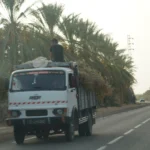 SudTunisie.com, votre expert en transferts et navettes privées pour découvrir les trésors du sud de la Tunisie. Que vous soyez en voyage d'affaires ou en vacances, nous nous engageons à vous offrir un service de transport de haute qualité, alliant confort, sécurité et ponctualité. Dans cet article, nous vous présentons nos services de transfert et navette privée, ainsi que les avantages uniques que nous offrons pour rendre votre séjour inoubliable. Pourquoi Choisir un Service de Transfert et Navette Privée ? Opter pour un transfert et navette privée présente de nombreux avantages par rapport aux options de transport public ou aux taxis traditionnels. Voici pourquoi vous devriez choisir SudTunisie.com pour vos besoins de transport. Confort et Sérénité Tout au Long de Votre Voyage Lorsque vous voyagez, le confort est essentiel. Nos véhicules sont équipés des dernières technologies pour garantir un trajet agréable. Des sièges ergonomiques, la climatisation et un espace suffisant pour vos bagages sont quelques-uns des avantages que nous offrons. De plus, nos chauffeurs professionnels veillent à ce que votre voyage se déroule sans encombre, vous permettant de vous détendre et de profiter du paysage tunisien. Ponctualité et Fiabilité Chez SudTunisie.com, nous comprenons l'importance d'être à l'heure, que ce soit pour un rendez-vous d'affaires ou pour rejoindre votre hébergement après un long vol. Nos chauffeurs sont formés pour respecter les horaires et anticiper les éventuels retards, garantissant ainsi que vous arriviez à destination à l'heure prévue. Sécurité Maximale Votre sécurité est notre priorité absolue. Tous nos chauffeurs sont hautement qualifiés et possèdent une connaissance approfondie des routes tunisiennes. Nos véhicules sont régulièrement entretenus et inspectés pour assurer une conduite sûre et fiable. Vous pouvez donc voyager en toute tranquillité, en sachant que vous êtes entre de bonnes mains. Service Personnalisé et Adapté à Vos Besoins Chaque voyageur a des besoins uniques. Que vous voyagiez seul, en couple, en famille ou en groupe, nous proposons des solutions de transport flexibles et personnalisées. Besoin d'un siège enfant ou d'un véhicule adapté ? Nous nous adaptons à vos exigences pour rendre votre voyage aussi confortable que possible. Nos Services de Transfert et Navette Privée Chez SudTunisie.com, nous proposons une gamme complète de services de transfert et navette privée pour répondre à toutes vos attentes. Voici un aperçu de nos principales offres. Transfert Aéroportuaire Nous offrons des services de transfert depuis et vers les principaux aéroports de Tunisie, notamment l'aéroport de Tunis-Carthage, l'aéroport de Djerba-Zarzis et l'aéroport de Tozeur-Nefta. Que vous arriviez ou partiez, notre équipe se charge de vous accueillir et de vous conduire en toute sécurité à votre destination finale. Navette Entre Villes et Sites Touristiques Explorez le sud de la Tunisie en toute simplicité grâce à nos services de navette entre les villes et les sites touristiques incontournables. Que vous souhaitiez visiter Tozeur, Douz, ou les magnifiques oasis du Sahara, nous organisons vos déplacements pour que vous puissiez profiter pleinement de votre séjour. Transferts d'Événements Spéciaux Que ce soit pour un mariage, une conférence, ou tout autre événement spécial, nous assurons des transferts fiables et élégants pour vos invités. Notre équipe travaille en étroite collaboration avec vous pour planifier chaque détail et garantir que tout se déroule parfaitement. Transferts Personnalisés sur Mesure Vous avez des besoins spécifiques ou un itinéraire particulier en tête ? Nous proposons des transferts personnalisés sur mesure pour répondre à toutes vos demandes. Contactez-nous pour discuter de vos besoins et nous créerons une solution de transport parfaitement adaptée à votre voyage. Les Avantages de Choisir SudTunisie.com En choisissant SudTunisie.com pour vos transferts et navettes privées, vous bénéficiez de nombreux avantages qui rendent notre service unique. Tarifs Compétitifs et Transparence des Prix Nous proposons des tarifs compétitifs sans compromis sur la qualité de nos services. Nos prix sont transparents, sans frais cachés, ce qui vous permet de planifier votre budget en toute sérénité. Profitez d'un excellent rapport qualité-prix avec SudTunisie.com. Réservation Facile et Rapide en Ligne Notre plateforme en ligne est conçue pour faciliter votre réservation. En quelques clics, vous pouvez réserver votre transfert ou votre navette privée, choisir votre véhicule et personnaliser votre service selon vos besoins. Visitez notre site ici pour en savoir plus sur nos offres de circuits désert. Service Client Dédié et Disponible 24/7 Notre équipe de service client est disponible 24 heures sur 24 et 7 jours sur 7 pour répondre à toutes vos questions et vous assister dans vos réservations. Que ce soit par téléphone, email ou via notre site web, nous sommes toujours là pour vous aider et garantir que votre expérience avec nous soit parfaite. Engagement pour la Satisfaction Client Votre satisfaction est au cœur de nos préoccupations. Nous nous engageons à fournir un service de haute qualité à chaque étape de votre voyage. De la réservation initiale à votre arrivée à destination, nous veillons à ce que chaque détail soit pris en compte pour rendre votre séjour agréable et sans stress. Comment Réserver Votre Transfert ou Navette Privée avec SudTunisie.com Réserver votre transfert et navette privée avec SudTunisie.com est simple et rapide. Voici comment procéder : Étape 1 : Visitez Notre Site Web Rendez-vous sur notre site web et explorez nos différentes options de transport. Que vous ayez besoin d'un transfert aéroportuaire ou d'une navette pour un circuit touristique, vous trouverez toutes les informations nécessaires. Étape 2 : Choisissez Votre Service Sélectionnez le type de service dont vous avez besoin, ainsi que la date et l'heure de votre voyage. Vous pouvez également spécifier des détails supplémentaires, comme le type de véhicule ou des besoins spécifiques. Étape 3 : Remplissez Vos Informations Complétez le formulaire de réservation avec vos informations personnelles et les détails de votre voyage. Assurez-vous de fournir toutes les informations nécessaires pour garantir un service fluide et sans accroc. Étape 4 : Confirmez et Payez Vérifiez les détails de votre réservation, puis procédez au paiement en ligne de manière sécurisée. Une fois votre réservation confirmée, vous recevrez un email de confirmation avec tous les détails de votre transfert ou navette privée. Étape 5 : Profitez de Votre Voyage Le jour de votre voyage, notre chauffeur vous attendra à l'heure et au lieu convenus, prêt à vous conduire en toute sécurité à votre destination. Détendez-vous et profitez de votre trajet avec SudTunisie.com. Témoignages de Nos Clients Satisfaits Un Service Impeccable "J'ai utilisé les services de SudTunisie.com pour un transfert de l'aéroport à mon hôtel à Tozeur, et j'ai été très impressionné par leur professionnalisme et leur ponctualité. Le véhicule était propre et confortable, et le chauffeur très sympathique. Je recommande vivement !" — Sophie, France Confort et Sécurité Assurés "Lors de notre voyage en famille dans le désert tunisien, nous avons opté pour une navette privée avec SudTunisie.com. Le véhicule était spacieux et parfaitement équipé, et le chauffeur connaissait très bien la région. Une expérience exceptionnelle !" — Marc et Clara, Belgique Une Expérience Inoubliable "Les transferts avec SudTunisie.com ont été un véritable atout pour notre séjour. Tout était parfaitement organisé, et nous n'avons eu aucun souci de transport. Merci pour ce service impeccable !" — Ahmed, Tunisie Découvrez Nos Circuits Désert En plus de nos services de transfert et navette privée, SudTunisie.com propose une variété de circuits désert pour vous permettre de découvrir les paysages spectaculaires du sud tunisien. Que vous souhaitiez explorer les vastes étendues du Sahara ou visiter des oasis cachées, nous avons le circuit qu'il vous faut. Pour plus de détails sur nos circuits désert, visitez cette page. Engagement envers le Développement Durable Chez SudTunisie.com, nous sommes conscients de l'impact environnemental du tourisme. C'est pourquoi nous adoptons des pratiques durables pour minimiser notre empreinte écologique. De la gestion responsable des déchets à l'utilisation de véhicules économes en carburant, nous nous engageons à préserver la beauté naturelle du sud tunisien pour les générations futures. Contactez-Nous pour un Devis Personnalisé Vous avez des besoins spécifiques ou des questions sur nos services ? N'hésitez pas à nous contacter pour obtenir un devis personnalisé. Notre équipe se fera un plaisir de vous aider et de vous proposer une offre sur mesure adaptée à votre budget et à vos préférences. Partagez Votre Expérience avec Nous Votre avis est précieux ! Après votre voyage, laissez un commentaire sur TripAdvisor pour partager votre expérience avec d'autres voyageurs. Votre retour nous aide à améliorer constamment nos services et à offrir des expériences encore meilleures. Conclusion : Faites Confiance à SudTunisie.com pour Vos Besoins de Transport En choisissant SudTunisie.com pour vos transferts et navettes privées, vous optez pour un service de transport de qualité supérieure, alliant confort, sécurité et fiabilité. Que vous soyez en voyage d'affaires ou en vacances, nous sommes là pour rendre votre séjour dans le sud de la Tunisie aussi agréable que possible. Réservez dès aujourd'hui et laissez-nous vous accompagner dans votre aventure tunisienne. Pour plus d'informations et pour réserver votre transfert ou navette privée, visitez notre site web ou contactez-nous directement. Nous sommes impatients de vous accueillir et de vous offrir le meilleur service de transport possible.