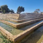 Partez à l'aventure avec nous et découvrez le Sahara Sud Tunisien comme jamais auparavant. Que vous soyez un amateur de paysages spectaculaires, un passionné d’histoire, ou simplement en quête de dépaysement total, notre circuit dans le désert avec un transfert navette privée vous offrira une expérience inoubliable. De la magie des dunes de sable doré aux oasis verdoyantes, en passant par des rencontres authentiques avec les habitants, chaque moment de ce voyage est conçu pour vous transporter au cœur de l’âme saharienne. Pourquoi choisir notre circuit dans le Sahara Sud Tunisien ? Un voyage sur mesure, conçu pour vous Nous savons que chaque voyageur a ses propres attentes et son propre rythme. C’est pourquoi nous avons conçu des circuits flexibles, afin que vous puissiez vivre le Sahara à votre manière. En tant qu’experts du désert tunisien, nous avons sélectionné les meilleurs itinéraires qui vous permettront de découvrir les trésors cachés de cette région fascinante. Que vous soyez en famille, entre amis ou en couple, nous adaptons chaque étape de votre voyage pour garantir une immersion totale dans l’univers magique du Sahara. Un confort optimal grâce à notre transfert navette privée Le confort est au cœur de notre approche. En optant pour notre transfert navette privée, vous bénéficiez d’un service personnalisé, loin des tracas des transports publics ou des groupes trop nombreux. Dès votre arrivée à l’aéroport ou à votre hôtel, notre équipe s’occupe de tout. Vous serez pris en charge par un chauffeur expérimenté, qui vous conduira directement à votre point de départ pour les excursions. Les véhicules sont spacieux, modernes et climatisés, assurant une expérience agréable tout au long du trajet. Avec nous, vous ne vous souciez de rien et pouvez pleinement vous concentrer sur la beauté du désert. Les incontournables du circuit Sahara Sud Tunisien Douz : Porte du désert et berceau de la culture nomade Douz est un lieu emblématique de notre circuit, souvent appelée la "porte du désert". Située à proximité des dunes, cette petite ville vivante est un véritable carrefour pour les nomades et les voyageurs. À Douz, vous découvrirez une culture millénaire, où le quotidien des habitants est encore marqué par les traditions nomades. La ville est également réputée pour son célèbre festival international du Sahara, un événement unique qui célèbre la musique, la danse et les coutumes des peuples du désert. Pour les amateurs de sensations fortes, vous pourrez tenter une balade à dos de dromadaire dans les dunes environnantes ou explorer les paysages à bord de véhicules tout-terrain. Nous avons conçu cette étape pour que vous puissiez découvrir Douz sous toutes ses facettes. Visites guidées, dégustation de produits locaux, et bien sûr, des moments de détente bien mérités au cœur des dunes vous attendent. Laissez-vous emporter par la magie de Douz et ses contrastes saisissants. Tozeur : L’oasis du Sahara, entre nature et patrimoine Tozeur est un autre incontournable de notre circuit. Connue pour ses oasis luxuriantes, cette ville est un véritable havre de paix au cœur du désert. En vous baladant dans la médina, vous serez émerveillé par les ruelles étroites bordées de maisons en briques d’argile. Tozeur est également un excellent point de départ pour découvrir les palmeraies et les sites naturels qui l’entourent. La ville est un mélange parfait de nature, de patrimoine et de culture. Mais ce qui fait véritablement la magie de Tozeur, c’est l’atmosphère particulière qui y règne. C’est un lieu où l’histoire se mêle au quotidien des habitants, qui ont su préserver leur mode de vie traditionnel tout en intégrant les influences modernes. Nous vous proposons des visites des sites historiques, des rencontres avec les artisans locaux, ainsi que des moments de relaxation au sein des oasis. Vous pourrez également partir à la découverte des gorges de Tamerza, une randonnée inoubliable qui vous plongera dans une nature sauvage et préservée. Ksar Ghilane : L’oasis secrète du désert Ksar Ghilane est l’une des destinations les plus magiques du sud tunisien. Cette oasis, située à l’entrée du Grand Erg Oriental, offre un cadre exceptionnel où se mêlent l’eau, les palmiers et le sable chaud. Idéale pour une halte dans votre parcours, Ksar Ghilane est un lieu parfait pour se détendre dans les sources thermales chaudes qui bordent l’oasis. Vous pourrez aussi participer à des activités comme des balades à dos de chameau ou en quad dans les dunes, pour une immersion totale dans l’ambiance du désert. Cette étape est un véritable coup de cœur pour les amoureux de nature et d’aventure. Nous proposons des bivouacs dans des tentes berbères, où vous pourrez passer la nuit sous un ciel étoilé, un moment de pure magie que vous n’oublierez pas de sitôt. Nos guides locaux vous dévoileront l’histoire fascinante de cet endroit, tout en vous faisant vivre une expérience unique. Matmata : Le village troglodytique, un monde sous terre Matmata est un lieu incontournable pour quiconque souhaite découvrir l’architecture traditionnelle du désert tunisien. Ce village est célèbre pour ses maisons troglodytiques, ces habitations creusées dans la roche, qui permettent de conserver une température agréable en toutes saisons. En visitant Matmata, vous aurez la chance de pénétrer dans l’intimité de ses habitants et de découvrir un mode de vie totalement différent du vôtre. Le village est également connu pour avoir servi de décor à certains films, notamment Star Wars, et vous pourrez visiter des sites emblématiques utilisés pour les tournages. Si vous êtes passionné par le cinéma ou l’architecture, cette étape du circuit est un véritable voyage dans le temps. Vous aurez l’opportunité d’explorer les maisons troglodytiques, d’interagir avec les habitants et de découvrir leur mode de vie ancestral. Le confort de notre transfert navette privée tout au long du circuit Tout au long de votre circuit, nous mettons un point d’honneur à garantir votre confort grâce à notre navette privée. Il est essentiel pour nous que vous puissiez profiter pleinement de chaque étape de votre voyage, sans vous soucier des détails logistiques. Notre transfert navette privée est conçu pour vous offrir une expérience fluide, agréable et sans stress. Nos chauffeurs sont des professionnels expérimentés et connaissent parfaitement la région. Ils s’assureront que vous êtes toujours à l’heure pour vos activités et vous fourniront des informations sur les lieux que vous traverserez. Avec notre service de transport sur mesure, vous pourrez vous concentrer sur l’essentiel : profiter de votre aventure dans le désert. Des véhicules modernes et climatisés pour un confort optimal Nos véhicules sont équipés de toutes les commodités modernes, dont la climatisation, pour garantir votre confort pendant les trajets. Nous comprenons que le climat du désert peut être extrême, c’est pourquoi nous mettons tout en œuvre pour que vous voyagiez dans les meilleures conditions possibles. Nos véhicules sont spacieux et adaptés à tous vos besoins, que vous soyez en famille ou en petit groupe. Vous pourrez ainsi vous détendre et profiter des paysages incroyables tout en étant confortablement installé. Une prise en charge personnalisée pour chaque client Votre expérience avec nous commence dès votre arrivée. Nous vous proposons une prise en charge personnalisée, que ce soit à l’aéroport, à la gare ou à votre hôtel. Nous nous adaptons à vos horaires et à vos besoins, afin que votre voyage se déroule sans encombre. Notre équipe est toujours disponible pour répondre à vos questions et vous fournir toutes les informations nécessaires tout au long du circuit. Conclusion : Pourquoi choisir sudtunisie.com pour votre voyage dans le Sahara Sud Tunisien En choisissant sudtunisie.com, vous optez pour un circuit complet et enrichissant qui vous permettra de découvrir le Sahara Sud Tunisien sous ses multiples facettes. Grâce à notre transfert navette privée, vous bénéficiez d’un service personnalisé et de qualité qui vous garantira un confort optimal tout au long de votre voyage. Notre équipe est composée de passionnés du désert qui se feront un plaisir de vous guider à travers les merveilles de cette région unique. Si vous êtes prêts à partir à la découverte du Sahara, n’attendez plus et contactez-nous dès aujourd’hui pour organiser votre prochaine aventure. Nous serons ravis de vous accompagner dans cette expérience inoubliable. Pour plus d’informations, n’hésitez pas à visiter notre page des circuits désert ou à nous contacter pour un devis personnalisé via ce lien : Devis voyage désert. Nous vous attendons pour une aventure unique au cœur du Sahara Sud Tunisien !