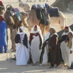 Nous sommes heureux de vous présenter notre guide détaillé sur le circuit et l’excursion privée dans le Sahara du Sud tunisien, une expérience unique qui vous plongera au cœur de paysages époustouflants et de traditions millénaires. Dans cet article, nous allons parcourir les différentes étapes d’un voyage inoubliable, en vous donnant un aperçu complet des lieux incontournables, des activités passionnantes et des conseils pratiques pour vivre pleinement votre escapade saharienne. Nous espérons que ces informations vous aideront à préparer un séjour à la fois riche en découvertes et en émotions, afin que vous puissiez profiter de chaque instant passé dans cet univers enchanteur. Pourquoi choisir un circuit dans le Sahara du Sud tunisien Le Sahara du Sud tunisien n’est pas seulement un vaste désert de dunes blondes : c’est aussi un territoire vibrant d’histoire et de diversité culturelle. Son attrait principal réside dans sa capacité à mêler, d’une part, des panoramas naturels à couper le souffle et, d’autre part, des traditions profondément ancrées chez les habitants qui peuplent la région. Nous sommes convaincus qu’une excursion privée dans cette partie de la Tunisie vous permettra de ressentir toute la magie du Sahara, en vous offrant des moments de rencontre authentique avec les populations locales et des vues spectaculaires sur des sites naturels incroyablement préservés. Des paysages d’exception Dès votre arrivée dans le Sud, vous serez émerveillé par la variété de panoramas que vous pourrez observer. Vous découvrirez des dunes dorées s’étendant à perte de vue, des oasis verdoyantes nichées au creux de palmeraies luxuriantes et des chotts (lacs salés) scintillants sous les rayons du soleil. Chaque étape de votre circuit sera l’occasion de faire une halte dans des espaces naturels uniques. Parmi les incontournables figurent : Les dunes du Grand Erg Oriental, où vous pourrez réaliser des randonnées en dromadaire ou en 4x4. Les oasis montagneuses de Chebika, Tamerza et Mides, qui offrent des vues vertigineuses sur les canyons et les cascades. Les vastes étendues du Chott El-Jérid, un lac salé célèbre pour ses mirages et pour ses variations de couleurs selon la saison. Une culture locale fascinante Le Sud tunisien est peuplé de tribus nomades et de communautés sédentaires, qui perpétuent des traditions ancestrales liées au désert. Vous aurez l’occasion de découvrir l’artisanat local, comme la poterie ou le tissage des tapis kilims, et de goûter à une gastronomie profondément liée aux ressources de la région. Que ce soit en savourant un couscous aux légumes ou en partageant un thé à la menthe sous une tente berbère, vous plongerez instantanément dans une ambiance chaleureuse, portée par l’hospitalité légendaire des habitants du Sud tunisien. Les étapes incontournables d’un circuit Sahara Sud tunisien Pour profiter pleinement de votre séjour, nous vous recommandons d’inclure certaines étapes emblématiques dans votre itinéraire. En voici quelques-unes qui, selon nous, sont essentielles pour découvrir toute la richesse de cette région : 1. Douz : la porte du désert Ambiance saharienne : Douz est souvent surnommée la « porte du Sahara ». Ce village typique se distingue par son marché animé, où vous pourrez dénicher des produits d’artisanat locaux et côtoyer des commerçants passionnés par leur terre. Les dunes environnantes : À proximité, vous trouverez de vastes dunes qui s’étirent à l’infini, offrant des décors de cartes postales et la possibilité de vous initier à la randonnée à dos de dromadaire. Le Festival International du Sahara : Si votre séjour coïncide avec la période du festival, vous aurez la chance d’assister à des spectacles traditionnels célébrant la culture nomade. 2. Tozeur : l’oasis aux mille palmiers Richesse architecturale : Tozeur est réputée pour ses constructions en briques d’argile et ses motifs géométriques, conférant une atmosphère unique à la vieille ville. Palmeraie luxuriante : La palmeraie de Tozeur est un véritable havre de fraîcheur. Une balade en calèche ou à pied au milieu de milliers de palmiers dattiers vous plongera dans un univers verdoyant, contraste saisissant avec les étendues désertiques. Activités culturelles : Vous pourrez visiter le musée Dar Cheraït, qui abrite une collection étonnante d’objets anciens témoignant de la richesse culturelle de la région. 3. Oasis de montagne : Chebika, Tamerza et Mides Décors féeriques : Dominées par des falaises abruptes, ces oasis de montagne se caractérisent par leurs sources naturelles, leurs cascades rafraîchissantes et leurs gorges profondes. Randonnées et panoramas : Nous vous recommandons de parcourir les sentiers qui traversent Chebika, Tamerza et Mides pour découvrir des points de vue saisissants sur la vallée et les formations rocheuses. Atmosphère authentique : Dans ces oasis reculées, vous croiserez moins de touristes, ce qui rendra votre expérience encore plus immersive et vous permettra de véritablement ressentir la quiétude du désert. 4. Matmata et l’héritage troglodytique Habitat troglodytique : Matmata est célèbre pour ses maisons creusées dans la roche. Cet habitat original permettait autrefois de se protéger de la chaleur écrasante du Sahara. Décor de film : Les paysages de Matmata ont servi de toile de fond à plusieurs scènes de la saga Star Wars. Les amateurs de cinéma pourront explorer les recoins qui ont inspiré les réalisateurs. Rencontres inoubliables : La population locale est particulièrement accueillante et se fera un plaisir de vous parler de son mode de vie traditionnel. Comment préparer votre excursion privée dans le désert Pour faire de cette aventure un moment inoubliable, nous vous suggérons de bien vous préparer en amont. Voici quelques conseils qui vous aideront à organiser votre excursion privée dans le Sahara du Sud tunisien. Choisir le bon itinéraire Avant de partir, il est crucial de définir la durée de votre séjour et les sites que vous souhaitez absolument visiter. Certains voyageurs optent pour un circuit de trois jours, d’autres préfèrent consacrer une semaine entière à la découverte du désert et de ses environs. Nous vous conseillons de prendre en compte les distances entre chaque site et de planifier un itinéraire réaliste, afin de ne pas vous sentir pressé par le temps. Pour vous inspirer et élaborer un programme complet, n’hésitez pas à consulter les circuits disponibles. Vous trouverez ainsi des idées détaillées et des propositions adaptées à tous les budgets et à toutes les préférences. Se munir de l’équipement adéquat Dans le désert, les températures peuvent varier considérablement entre le jour et la nuit. Il est donc essentiel de prévoir des vêtements légers, mais aussi des pulls ou vestes pour faire face à la fraîcheur nocturne. N’oubliez pas non plus : Des lunettes de soleil de bonne qualité pour protéger vos yeux des rayons et du sable. De la crème solaire à indice élevé pour prévenir les coups de soleil. Un chapeau ou un foulard pour protéger votre tête et votre cou. Des chaussures confortables pour marcher dans le sable ou sur les sentiers rocailleux. Une lampe frontale ou une lampe de poche pour vous déplacer dans le campement la nuit. Opter pour une excursion privée encadrée Faire appel à un guide local est souvent la meilleure option pour découvrir le Sahara en toute sécurité et bénéficier d’un échange enrichissant avec des personnes qui connaissent intimement la région. Un guide expérimenté vous permettra de : Profiter d’un itinéraire personnalisé : Il tiendra compte de vos envies et de votre rythme pour élaborer un circuit sur mesure. Découvrir des endroits secrets : Les guides locaux connaissent les recoins les plus pittoresques et les moins fréquentés du désert. S’assurer une logistique sans faille : Gestion du transport, installation des campements, préparation des repas, votre guide et son équipe veilleront à ce que vous puissiez profiter pleinement de chaque instant. Nous vous recommandons donc fortement de miser sur un circuit privé pour une immersion totale dans l’univers saharien. Activités mémorables à vivre dans le Sahara Au-delà de la simple contemplation des paysages, plusieurs activités peuvent rendre votre aventure dans le Sahara du Sud tunisien encore plus passionnante. Voici quelques idées qui, selon nous, feront de votre séjour un moment inoubliable : 1. Randonnées en dromadaire ou en 4x4 Explorer le désert à dos de dromadaire est une expérience authentique qui vous fera ressentir la quiétude et la puissance des grands espaces. Si vous préférez une approche plus dynamique, vous pouvez opter pour un circuit en 4x4, qui vous offrira la possibilité d’atteindre des zones plus reculées, tout en vous laissant contempler les dunes changeantes au fil des kilomètres. 2. Coucher de soleil sur les dunes Assister à un coucher de soleil au sommet d’une dune est un spectacle absolument magique. Les couleurs du ciel passent progressivement du jaune à l’orange, puis au rose, avant de laisser place à une nuit étoilée d’une clarté fascinante. Prenez le temps d’apprécier ce moment de calme et de douceur, où vous aurez l’impression d’être seul au monde. 3. Soirées sous la tente berbère Une fois la nuit tombée, vous pourrez rejoindre votre campement saharien pour une soirée conviviale. Les tentes berbères, décorées de tapis et de coussins confortables, vous offriront un cadre chaleureux propice à la dégustation d’un plat typique, comme la chorba ou le brik. N’hésitez pas à entonner quelques chants traditionnels avec vos hôtes, ou simplement à discuter autour d’un feu de camp pour découvrir des anecdotes fascinantes sur la vie dans le désert. 4. Découverte de la flore et de la faune désertiques Contrairement aux idées reçues, le désert n’est pas dépourvu de vie. De nombreuses espèces animales et végétales ont su s’adapter aux conditions extrêmes du Sahara. Vous pourrez apercevoir, avec un peu de chance, des fennecs (petits renards du désert), des gerboises (rongeurs sauteurs) ou encore observer des acacias sahariens résistants à la sécheresse. 5. Visites d’ateliers et marchés artisanaux Dans les villages du Sud tunisien, vous trouverez plusieurs ateliers où se perpétuent des techniques ancestrales de poterie, de tissage ou de confection de bijoux en argent. Vous pourrez également flâner dans les souk locaux pour dénicher des épices, des dattes ou encore des souvenirs typiques qui perpétuent le savoir-faire traditionnel. Immersion totale et rencontres authentiques Nous pensons que l’un des plus grands plaisirs d’un circuit dans le Sahara du Sud tunisien réside dans la rencontre avec les habitants et l’immersion dans un mode de vie préservé. Les familles nomades et sédentaires sont fières de partager leur culture et leur passion pour ces terres désertiques. Vous aurez peut-être l’occasion de participer à une cérémonie du café, de déguster du pain cuit dans le sable, ou encore d’apprendre les rudiments de la danse traditionnelle. Chaque instant passé en compagnie des habitants sera l’occasion d’un échange riche, d’un apprentissage mutuel et d’un souvenir précieux que vous emporterez avec vous longtemps après votre retour. Planifier votre prochain voyage au Sahara du Sud tunisien Si vous souhaitez concrétiser votre projet et partir à la découverte des merveilles du désert tunisien, nous vous invitons à nous contacter afin de définir ensemble les grandes lignes de votre futur circuit. Que vous recherchiez une aventure sportive, une escapade en famille ou une retraite paisible au cœur des dunes, nous serons ravis de vous guider et de vous conseiller pour concevoir un programme sur mesure. Vous pouvez également faire une demande de devis ici, afin que nous puissions vous proposer un itinéraire adapté à vos envies, à votre budget et à la durée de votre séjour. Nous mettons un point d’honneur à respecter votre rythme et à vous offrir une expérience authentique, axée sur la découverte et les rencontres, tout en garantissant votre confort et votre sécurité. Hébergement et confort Durant votre voyage, vous aurez le choix entre différentes formules d’hébergement : nuitées en hôtels traditionnels (ksar ou maisons d’hôtes), bivouac dans des tentes berbères équipées, ou encore campements plus rudimentaires pour vivre une immersion totale. Dans tous les cas, nous veillons à ce que votre séjour se déroule dans les meilleures conditions possibles. Les hébergements sont généralement pourvus de lits confortables, de sanitaires adéquats et d’espaces communs propices à la convivialité. Transport et accessibilité La plupart du temps, les circuits dans le Sud tunisien incluent un transport en 4x4 avec chauffeur-guide, afin de traverser sans encombre les pistes sablonneuses et les routes rocheuses. Pour rejoindre votre point de départ, vous pouvez opter pour une arrivée à l’aéroport de Tunis ou de Tozeur, selon les disponibilités et la durée de votre séjour. Une fois sur place, vous pourrez profiter d’un accueil personnalisé pour entamer votre périple. Respect de l’environnement et tourisme responsable Nous accordons une grande importance au respect de l’environnement et des populations locales. Il est essentiel, selon nous, de veiller à la protection de ces espaces naturels fragiles et de soutenir les initiatives menées par les communautés qui y vivent. Dans cette optique, nous privilégions les collaborations avec des guides locaux, le recours à des campements gérés par des habitants de la région et la sensibilisation de nos voyageurs aux bonnes pratiques (gestion des déchets, économie d’eau, respect des coutumes locales, etc.). Conclusion : offrez-vous un souvenir impérissable dans le Sahara Un circuit et une excursion privée dans le Sahara du Sud tunisien constituent une aventure hors du commun. Les dunes imposantes, les oasis nichées au creux de canyons rocheux, la richesse culturelle et l’accueil chaleureux des habitants font de cette région un véritable trésor à découvrir. Nous avons à cœur de faire de votre séjour un moment unique, où chaque détail aura été pensé pour vous rapprocher un peu plus de la beauté sauvage du désert et de la générosité de ses peuples. En choisissant de vivre cette expérience saharienne avec nous, vous aurez la garantie d’un accompagnement professionnel, d’itinéraires parfaitement adaptés à vos attentes et d’une immersion profonde dans les traditions séculaires du Sud tunisien. Laissez-vous surprendre par la magie du Sahara et repartez avec des souvenirs mémorables, des photos spectaculaires et, surtout, l’envie de partager à votre tour votre passion pour cette terre extraordinaire. Nous espérons que cet article vous aura donné envie de franchir le pas et de partir à la conquête des dunes dorées. Pour en savoir plus sur notre offre de circuits désert et planifier votre prochaine aventure, consultez notre page dédiée. Nous serons ravis de vous accueillir et de vous faire découvrir toute la beauté de la Tunisie saharienne, loin des sentiers battus.
