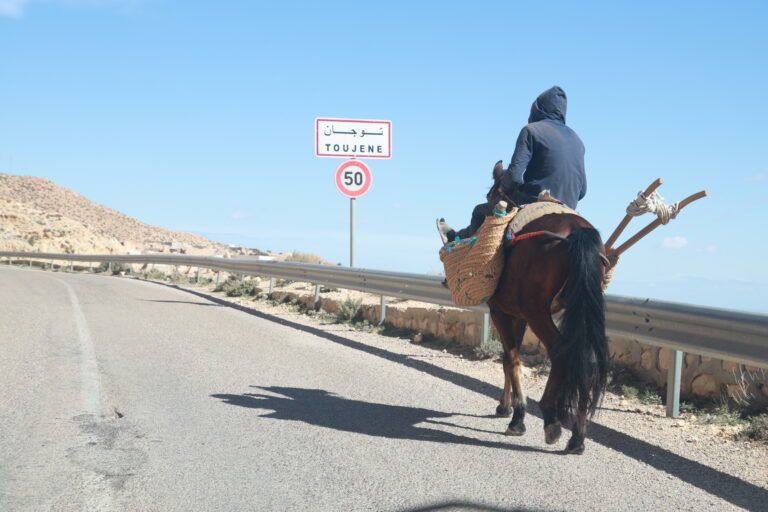 La Tunisie, souvent célébrée pour ses plages dorées et son patrimoine historique, cache aussi un trésor bien moins connu, mais ô combien captivant : ses itinéraires de randonnée. Entre la Méditerranée scintillante, les chaînes montagneuses de l’Atlas, les oasis suspendues et l’immensité du désert du Sahara, le pays offre une diversité de paysages propice à l’aventure, à la découverte de soi et à l’évasion. La randonnée en Tunisie est bien plus qu’un simple loisir : c’est une immersion dans des paysages bruts, une rencontre avec des cultures enracinées et une reconnexion profonde avec la nature. Une diversité géographique unique pour tous les profils de randonneurs Du nord verdoyant au sud aride, la Tunisie est un pays de contrastes. Pour les passionnés de nature, chaque région offre une ambiance différente : Au nord, les montagnes de Kroumirie et de Mogods proposent des sentiers forestiers luxuriants, traversant des forêts de chênes-lièges et de pins. C’est l’endroit idéal pour les randonnées en famille, avec des températures douces et des paysages bucoliques. Au centre, les montagnes de l’Atlas tunisien, comme la chaîne du Djebel Zaghouan, offrent des parcours plus escarpés, souvent choisis par des randonneurs aguerris en quête de panoramas spectaculaires. Là, chaque pas est une conquête, chaque sommet une récompense. Au sud, l’expérience devient radicalement différente. Les dunes ondulantes du Grand Erg oriental et les plateaux de l’Atlas saharien appellent à la contemplation et au dépassement de soi. Marcher dans le désert tunisien, c’est plonger dans une mer de sable, dans un silence absolu, loin de toute agitation moderne. Les randonnées côtières : entre bleu de la mer et senteurs méditerranéennes La Tunisie possède plus de 1300 kilomètres de côtes, et certaines sont idéales pour des randonnées en bord de mer. La région du Cap Bon, par exemple, propose de superbes sentiers entre falaises et criques, notamment autour de Haouaria et de Korbous. Ces circuits permettent d'admirer la mer Méditerranée sous tous ses angles, avec une végétation parfumée d’eucalyptus et de myrte. À Tabarka, les collines surplombant la mer offrent un mélange harmonieux entre mer et montagne, idéales pour les amateurs de photos et les amoureux de nature sauvage. La randonnée autour des Aiguilles de Tabarka est particulièrement appréciée pour ses formations rocheuses spectaculaires. Les montagnes de l’intérieur : un trésor de biodiversité et d’histoire Le nord-ouest de la Tunisie, avec les régions de Béja, Le Kef et Jendouba, est un paradis méconnu pour les randonneurs. Ici, les montagnes de la Kroumirie, recouvertes de forêts humides, regorgent de sources, de cascades et d’animaux sauvages. Le parc national d’El Feija, par exemple, abrite des sangliers, des cerfs de Barbarie et une flore endémique étonnante. Dans la région de Zaghouan, le Djebel Zaghouan domine à plus de 1300 mètres d'altitude et propose des circuits de randonnée variés. L’un des sentiers les plus populaires mène à l’ancien temple des eaux romain, construit à la source qui alimentait autrefois Carthage via un aqueduc impressionnant. Le désert tunisien : l’expérience ultime de randonnée Randonnée rime souvent avec dépassement de soi, et c’est précisément ce que propose le désert tunisien. Le sud du pays, notamment autour de Douz, Ksar Ghilane, Matmata et Tataouine, offre des randonnées sahariennes à couper le souffle. Accompagné d’un guide et souvent de dromadaires, le randonneur s’engage dans des circuits de plusieurs jours, entre dunes, plateaux rocailleux et oasis isolées. Marcher dans le désert est une expérience sensorielle rare : le silence profond, les couchers de soleil flamboyants, les nuits étoilées et l’hospitalité des nomades marquent les esprits à jamais. Les circuits les plus populaires incluent la traversée des dunes de l’Erg oriental, la découverte des ksours troglodytiques de Chenini et Douiret, ou encore l’ascension du Djebel Tebaga. Randonnées culturelles : entre patrimoine et traditions En Tunisie, la randonnée est aussi culturelle. Chaque village traversé est une porte ouverte sur des traditions ancestrales. Les randonneurs peuvent explorer des vestiges romains à Haïdra ou à Sbeïtla, découvrir des mausolées soufis perchés sur des montagnes, ou encore visiter des villages berbères troglodytiques. Dans le sud, les sentiers reliant les anciens greniers fortifiés (ksours) permettent d’explorer un patrimoine architectural unique au monde, niché dans des paysages lunaires. Marcher dans cette région, c’est remonter le temps, de l’époque des caravaniers à celle des tribus semi-nomades. Une activité respectueuse de l’environnement et du tourisme durable La randonnée en Tunisie s’inscrit parfaitement dans la logique d’un tourisme durable. Contrairement au tourisme de masse, elle valorise les ressources locales, crée un lien fort entre visiteurs et communautés, et respecte les écosystèmes. De nombreuses associations et guides locaux œuvrent pour le développement d’un tourisme responsable, avec des hébergements écologiques, des repas bio, et des circuits conçus pour limiter l’empreinte carbone. C’est aussi une activité accessible : avec peu de matériel, un bon guide et une volonté de marcher, on peut découvrir des lieux extraordinaires, loin des circuits classiques. Meilleures périodes pour randonner en Tunisie La Tunisie bénéficie d’un climat méditerranéen au nord et saharien au sud. Ainsi, les meilleures périodes pour la randonnée varient selon les régions : Printemps (mars à mai) : idéal partout dans le pays. Les paysages sont verdoyants, les températures agréables et la floraison spectaculaire. Automne (octobre à novembre) : parfait pour le désert et le sud en général. Les chaleurs sont moins écrasantes, et les nuits sont douces. Hiver (décembre à février) : adapté aux randonnées dans le sud saharien. Attention cependant aux températures très fraîches la nuit. Été (juin à août) : déconseillé pour la randonnée dans le sud, en raison des fortes chaleurs, mais encore possible dans les zones côtières et en altitude. Conseils pratiques pour une randonnée réussie Pour profiter pleinement de votre expérience de randonnée en Tunisie, quelques recommandations sont essentielles : Toujours partir avec un guide certifié, surtout dans les zones désertiques ou montagneuses. Prendre beaucoup d’eau, une protection solaire (chapeau, lunettes, crème), et des chaussures de randonnée adaptées. Respecter les sites naturels et culturels : ne pas laisser de déchets, ne pas cueillir de plantes protégées, et respecter les habitants. Privilégier les circuits proposés par des agences locales ou des associations spécialisées en écotourisme. Des circuits pour tous les niveaux Que vous soyez randonneur débutant, amateur de balades contemplatives ou aventurier en quête de défis, la Tunisie a quelque chose à vous offrir. Voici quelques idées de circuits classés par niveau : Débutant : Sentiers forestiers de Ain Draham (2-3 h) Randonnée au Cap Bon (Korbus – Jebel Ressas) Circuit des oliveraies de Testour Intermédiaire : Ascension du Djebel Zaghouan Traversée des montagnes de Fernana à Ain Soltane Sentiers côtiers de Tabarka à El Kala Avancé : Trek de 5 jours dans le Grand Erg oriental Circuit des ksours troglodytiques du Dahar Randonnée de Tozeur à Chebika via les oasis de montagne Conclusion : La Tunisie, joyau caché des randonneurs En résumé, randonner en Tunisie, c’est explorer un pays aux multiples visages, rencontrer une population chaleureuse, découvrir des traditions anciennes et s’émerveiller devant des paysages inoubliables. Que vous soyez attiré par la fraîcheur des forêts du nord, la grandeur majestueuse des montagnes de l’intérieur ou l’immensité silencieuse du Sahara, la Tunisie vous tend les bras avec générosité. Choisissez un sentier, lacez vos chaussures et partez à la rencontre d’une Tunisie authentique, loin des clichés, au rythme de vos pas.