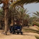 Le Sud tunisien n’est pas qu’un décor de carte postale ; c’est un terrain de jeu grandeur nature pour les passionnés de randonnée, de culture nomade et de silence étoilé. Nous vous invitons à partager notre vision d’un circuit privé, pensé pour sublimer chaque grain de sable et chaque sourire croisé sur la piste. Pourquoi une randonnée privée dans le Sahara tunisien change tout Choisir un circuit privatif, c’est décider du tempo, des détours et de la profondeur de l’aventure. À bord de nos 4×4 climatisés, nous quittons les sentiers battus pour explorer un monde où les calendriers n’ont plus cours. Nous faisons halte quand l’envie nous prend, que ce soit pour humer l’odeur du pain qui cuit sur la braise ou pour grimper une dune qui se pare d’or au crépuscule. Liberté totale : voilà notre crédo. Vous rêvez d’un lever de soleil sur le Chott El-Jerid ? Nous réglons l’alarme. Vous préférez une sieste à l’ombre des tamaris ? Nous plantons la tente. Votre bien-être décide, notre équipe suit. Découvrez le programme complet et nos options sur sudtunisie.com/voyage/circuits-desert. Itinéraire exclusif : de Tozeur aux confins de l’Erg Oriental 1. Tozeur, berceau des oasis vivantes Nous inaugurons le voyage par les ruelles de la vieille médina, où les briques d’adobe dessinent des motifs géométriques uniques. Entre deux murs ocres, l’appel du muezzin résonne comme un signal de départ. Après un café épicé au gingembre, nous traversons la palmeraie à pied ; les dattiers, gigantesques cathédrales végétales, bruissent doucement sous le vent du désert. 2. Chott El-Jerid : mer de sel et mirages Au volant, le paysage s’étale comme une feuille blanche. La croûte de sel craque sous les pneus, le soleil dessine des mirages d’eau scintillante. Quelques kilomètres plus loin, un vieux puits militaire, vestige de l’époque coloniale, rappelle que l’homme s’est toujours battu pour l’eau dans ces contrées. Nous nous arrêtons pour immortaliser le reflet de notre convoi dans la croûte salée, un cliché qui, promis, fera frémir vos abonnés Instagram. 3. Douz, porte du désert et artisanat saharien Douz embaume la rose des sables et le cuir henné. Le souk s’y tient chaque jeudi ; nous y flânons pour dénicher un chèche aux nuances indigo, idéal pour se protéger du sirocco. Au déjeuner, nous goûtons au bsissa, mélange de farine torréfiée, dattes et huile d’olive, véritable carburant des randonneurs bédouins. 4. El-Faouar et les dunes dorées de l’Erg Oriental C’est là que la piste s’efface et que commence le royaume du sable. Nous marchons trois à quatre heures, légers comme l’air, accompagnés de dromadaires porteurs. Les crêtes se succèdent, on glisse, on grimpe, on rit ; le silence, lui, reste maître absolu. À la tombée de la nuit, nous dressons le bivouac. Le dîner, mijoté dans une marmite en fonte, mêle agneau, pommes de terre, carvi et coriandre. Autour du feu, un vieux oued sec nous sert d’amphithéâtre ; le ciel, zébré de la Voie lactée, fait office de plafond lumineux. 5. Ksar Ghilane, l’oasis thermale Réveil à l’aube : les dunes rougeoient. Après un brin de toilette sommaire, nous rangeons le camp et chaussons nos sandales de marche pour rejoindre Ksar Ghilane. Les pieds plongent dans la source chaude ; l’eau, légèrement soufrée, délasse les muscles fatigués. À l’horizon, un vieux fort romain défie le temps. Nous pique-niquons à l’ombre d’un palmier : salade méchouia, pain tabouna encore tiède, olives confites. L’après-midi, deux options : chevaucher un quad pour rallier le fort ou lézarder sur une natte berbère au bord du bassin. 6. Les villages perchés de Chenini et Douiret En quittant le sable, la montagne nous tend ses bras. Les maisons troglodytes s’agrippent à la falaise ; certaines sont encore habitées par les descendants des tribus berbères. Un vieil homme, mains tatouées de henné, nous ouvre sa porte. Son fils mouline le grain dans un antique moulin à bras, sa femme prépare un couscous perlé. Nous grimpons jusqu’à la mosquée blanche au sommet ; sous nos pieds, le panorama s’étire de crêtes en vallées, jusqu’à l’infini ocre du désert. 7. Matmata, décor lunaire et maisons troglodytes Dernière étape avant le retour : Matmata, immortalisée dans le film Star Wars. Les maisons creusées dans la roche offrent une fraîcheur étonnante. Nous partageons un thé à la menthe avec une famille troglodyte, puis filons vers Gabès pour la boucle finale. La mer effleure le désert ; l’horizon se trouble d’embruns. Expériences signatures : marcher, goûter, vibrer Randonnée guidée au rythme des nomades Nos guides sont nés ici ; ils lisent la dune comme un livre ouvert. Ils connaissent les herbes qui soulagent, le chant des gerboises, la trajectoire des étoiles. Marcher à leurs côtés, c’est s’offrir un cours de géologie à ciel ouvert, agrémenté d’anecdotes sur la vie nomade, les rituels de mariage, la poésie bédouine. Bivouac confort sous un milliard d’étoiles Notre campement, monté avant la nuit, comporte tentes sahariennes spacieuses, matelas mousse et couvertures chaudes. Nous fournissons également des toilettes sèches et un coin lavabo. Le must : la douche solaire improvisée, pour rincer la poussière avant de glisser sous la couette. Après le dîner, place à la musique : bendir, gasba, percussions… Les chants se mêlent aux histoires de djinns qui peuplent les dunes. Le feu crépite, le thé bout, la magie opère. Gastronomie du désert : simple et savoureuse Ici, chaque repas est une petite fête. Nous cuisinons au feu de bois, dans des marmites qui ont parcouru mille kilomètres de piste. Au menu : méchoui d’agneau parfumé au romarin sauvage, chakchouka pimentée, dattes farcies aux amandes. Les végétariens ne sont pas oubliés : tajine d’haricots blancs, salade de carottes au cumin, couscous aux légumes. Et pour le petit-déjeuner, galettes chaudes, confiture de figues et café turc remplissent d’énergie pour l’étape suivante. Soirée astronomie et contes sahariens Quand la lueur du feu décline, nous sortons le télescope. Orion, Sirius, les Pléiades : le ciel n’a jamais été aussi net. Entre deux observations, nos hôtes racontent les légendes du renard farceur ou du roi Antar, poète guerrier. On finit par s’endormir au son du vent, berceuse éternelle. Conseils pratiques pour un circuit réussi dans le Grand Sud Équipement malin : emportez un sac à dos léger, une gourde isotherme, un chèche protecteur, des chaussures de marche déjà faites à vos pieds. Saisons à privilégier : mars-mai et octobre-novembre offrent des températures clémentes (20-30 °C). Juillet-août peut grimper à 45 °C ; réservez à d’autres dates si vous craignez la chaleur intense. Santé et sécurité : pensez à une crème solaire indice 50, un répulsif anti-moustiques pour les oasis, et vos médicaments habituels. Nous prévoyons trousse de secours complète et glacière médicale. Formalités : passeport valable six mois après la date de retour. Aucun visa pour les ressortissants de l’UE pour les séjours touristiques inférieurs à 90 jours. Respect de l’environnement : nous suivons la règle « Leave No Trace ». Tous les déchets sont rapatriés, les cendres de feu soigneusement enterrées, et nous n’arrachons aucune plante, même les plus banales. Photographie : les habitants apprécient qu’on leur demande la permission avant un portrait. Un sourire, un mot en arabe (« sabah el kheir », bonjour) et le tour est joué ! Nos engagements responsables et solidaires Nous croyons qu’un tourisme durable est possible, même dans les zones les plus fragiles. Ainsi : 80 % des prestations sont assurées par des équipes locales : cuisiniers, chameliers, artisans. Cuisine locale et produits frais : nous achetons nos légumes aux marchés de Douz et Tozeur, soutenant l’économie régionale. Formation continue : chaque guide suit un stage annuel en secourisme et en normes de sécurité internationale. Compensation carbone : pour chaque circuit, nous finançons la plantation de dix palmiers dattiers dans la palmeraie de Hazoua. Pourquoi nous faire confiance ? Témoignages et garanties Transparence tarifaire : aucun supplément caché, tout est clairement indiqué dès le devis. Équipe francophone : du premier e-mail à l’aéroport, vous échangez avec des interlocuteurs qui maîtrisent votre langue et votre culture. Assurance et sécurité : contrats d’assistance internationale, véhicules révisés avant chaque départ, GPS et téléphone satellite à bord. Réputation solide : nos voyageurs partagent leurs avis enthousiastes sur TripAdvisor. Lisez-les ici : Avis Sud Tunisie – Tozeur. Réservez votre prochaine aventure dès maintenant Prêt à enfiler vos chaussures de marche et à écrire votre propre chapitre saharien ? Il suffit de quelques clics pour nous décrire vos envies ; nous construisons votre itinéraire sur mesure, budget maîtrisé, rythme adapté. Demandez votre devis personnalisé via ce formulaire sécurisé : Contact & devis désert Sud Tunisie – nous répondons sous 24 h, même le week-end. Le désert attend, immobile et immensément vivant. Ensemble, foulons ses sables et laissons-lui graver nos pas et nos souvenirs. À très vite sous le soleil méridional !