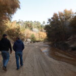 La Tunisie, ce petit pays d'Afrique du Nord bordé par la Méditerranée, regorge de trésors insoupçonnés pour les amateurs de randonnée. On pense souvent aux plages, à l'histoire antique ou aux souks colorés… mais très peu s’imaginent que ce pays offre aussi des paysages spectaculaires pour les marcheurs. Entre dunes de sable doré, oasis verdoyantes, montagnes de l’Atlas et villages berbères perchés, la randonnée en Tunisie est bien plus qu’une simple activité : c’est un voyage sensoriel et humain hors du commun. Alors, si vous cherchez une aventure authentique, en dehors des sentiers battus, voici pourquoi partir en randonnée en Tunisie devrait être en haut de votre liste. Un éventail de paysages à couper le souffle pour les randonneurs On ne le dira jamais assez : la Tunisie est un pays de contrastes. Sur un territoire relativement petit, on passe rapidement de la mer à la montagne, de la palmeraie luxuriante aux plaines désertiques. Ce qui en fait un terrain de jeu parfait pour les amateurs de marche. Dans le sud, le Sahara tunisien offre un terrain d’aventure unique au monde. Imaginez-vous marcher entre les dunes ondulantes de Douz ou Ksar Ghilane, sous un ciel étoilé d’une clarté irréelle. Ici, chaque pas dans le sable chaud est une méditation. La lumière change, les couleurs dansent, et le silence est total. À l’ouest, les montagnes de l’Atlas tunisien offrent un tout autre décor : gorges profondes, falaises abruptes, forêts clairsemées et villages troglodytes. Le secteur de Matmata et Chenini est un incontournable pour ceux qui veulent allier effort physique et découverte culturelle. On y marche à travers des sentiers muletiers, on traverse des plateaux caillouteux, et on découvre des habitations creusées à flanc de montagne. Et que dire des oasis de montagne, comme celles de Chebika, Tamerza ou Midès ? Ces lieux féeriques sont des haltes idéales au cours d’un trek dans le sud tunisien. Le contraste entre les falaises sèches et les cascades d’eau douce est tout simplement magique. Des circuits de randonnée adaptés à tous les niveaux Pas besoin d’être un athlète pour profiter des randonnées en Tunisie. Que vous soyez un marcheur du dimanche ou un trekkeur chevronné, vous trouverez toujours un circuit adapté à votre niveau. Pour les débutants ou les familles, des balades à la journée sont organisées dans des lieux accessibles : les palmeraies de Tozeur ou de Nefta, les montagnes douces du nord-ouest, ou les plages sauvages de Cap Bon. Ces sorties permettent une première immersion douce, tout en profitant de superbes panoramas. Pour les randonneurs plus expérimentés, des circuits de plusieurs jours dans le désert sont proposés avec bivouac. Là, on marche entre 4 à 6 heures par jour, accompagnés de dromadaires qui portent les bagages, et on dort sous tente ou à la belle étoile. C’est une expérience inoubliable qui mêle aventure, nature et retour à l’essentiel. Parmi les circuits les plus prisés, on retrouve : Trek dans le Grand Erg Oriental, entre Douz et Ksar Ghilane Randonnée à travers les villages berbères de Tataouine à Chenini Traversée des oasis de montagne, de Tamerza à Midès Excursion saharienne avec nuit sous tente, depuis Tozeur ou Matmata Pour découvrir tous les itinéraires disponibles et préparer votre aventure, rendez-vous ici : 👉 Nos circuits désert à découvrir Une immersion dans la culture locale et les traditions du Sud tunisien Ce qui rend la randonnée en Tunisie si particulière, c’est aussi la richesse humaine qu’on rencontre en chemin. Car ici, la marche n’est jamais qu’un effort physique : c’est une invitation à la rencontre. Dans le désert, vous serez guidés par des nomades ou des chameliers locaux, souvent d’un calme et d’une sagesse impressionnants. Ils vous feront goûter au pain cuit dans le sable, au thé à la menthe infusé au feu de bois, et vous raconteront des histoires du désert à la lumière du feu de camp. Dans les villages berbères, vous croiserez des artisans, des femmes tissant la laine, des enfants jouant dans les ruelles étroites. Loin du tourisme de masse, ces moments de partage sont sincères et précieux. Et puis, il y a la cuisine tunisienne que l’on découvre différemment en randonnée. Un couscous mijoté au pied d’une dune, une chakchouka dégustée en pleine nature, ou encore des dattes fraîches cueillies dans une oasis… autant de plaisirs simples qui font partie intégrante du voyage. Quand partir pour une randonnée en Tunisie ? La Tunisie bénéficie d’un climat agréable, mais toutes les saisons ne sont pas propices à la marche, surtout dans le sud. L’automne (octobre à décembre) est sans doute la meilleure période pour randonner. Les températures sont douces, le ciel est dégagé, et la lumière sublime les paysages. Le printemps (mars à mai) est également une période idéale. Les oasis sont en fleurs, les températures encore fraîches, et la nature reprend vie après l’hiver. L’hiver (janvier à février) peut convenir à des balades courtes dans le sud, mais il peut faire frais la nuit. L’été (juin à septembre) est à éviter, surtout dans le désert, à cause de la chaleur extrême pouvant dépasser les 45 °C. Pensez toujours à bien vous équiper : chaussures de marche, foulard pour le sable, lunettes de soleil, crème solaire et bien sûr… beaucoup d’eau ! Randonnée en Tunisie : une expérience accessible et bien encadrée Bonne nouvelle : il est très simple d’organiser une randonnée en Tunisie, que vous soyez en solo, en couple ou en groupe. De nombreuses agences locales proposent des formules complètes incluant le transport, l’hébergement, les repas, les guides, et même les dromadaires pour les circuits sahariens. Pour une organisation professionnelle et authentique, nous vous recommandons vivement de faire appel à une équipe locale expérimentée. Leur connaissance du terrain et leur attachement aux traditions garantissent une immersion vraie et sécurisée. 👉 Pour obtenir un devis personnalisé et planifier votre voyage : Contactez-nous ici Et si vous souhaitez lire des avis de voyageurs qui ont tenté l’expérience, jetez un œil aux témoignages sur TripAdvisor : 👉 Voir les commentaires ici Conclusion : marcher pour mieux ressentir la Tunisie En Tunisie, la randonnée est bien plus qu’un sport ou une activité touristique. C’est une manière de ressentir l’âme du pays, de se connecter à ses habitants, à ses paysages et à ses traditions. C’est aussi une aventure personnelle, un moment de pause et de recentrage loin du stress quotidien. Alors, que vous soyez amoureux du désert, passionné de culture, curieux de nature ou simplement en quête d’évasion… la randonnée en Tunisie vous tend les bras. Et croyez-nous, une fois que vous aurez foulé le sable chaud du Sahara ou contemplé un coucher de soleil depuis un canyon oublié… vous n’aurez qu’une envie : y retourner.