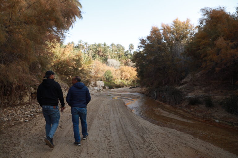 La Tunisie, ce petit pays d'Afrique du Nord bordé par la Méditerranée, regorge de trésors insoupçonnés pour les amateurs de randonnée. On pense souvent aux plages, à l'histoire antique ou aux souks colorés… mais très peu s’imaginent que ce pays offre aussi des paysages spectaculaires pour les marcheurs. Entre dunes de sable doré, oasis verdoyantes, montagnes de l’Atlas et villages berbères perchés, la randonnée en Tunisie est bien plus qu’une simple activité : c’est un voyage sensoriel et humain hors du commun. Alors, si vous cherchez une aventure authentique, en dehors des sentiers battus, voici pourquoi partir en randonnée en Tunisie devrait être en haut de votre liste. Un éventail de paysages à couper le souffle pour les randonneurs On ne le dira jamais assez : la Tunisie est un pays de contrastes. Sur un territoire relativement petit, on passe rapidement de la mer à la montagne, de la palmeraie luxuriante aux plaines désertiques. Ce qui en fait un terrain de jeu parfait pour les amateurs de marche. Dans le sud, le Sahara tunisien offre un terrain d’aventure unique au monde. Imaginez-vous marcher entre les dunes ondulantes de Douz ou Ksar Ghilane, sous un ciel étoilé d’une clarté irréelle. Ici, chaque pas dans le sable chaud est une méditation. La lumière change, les couleurs dansent, et le silence est total. À l’ouest, les montagnes de l’Atlas tunisien offrent un tout autre décor : gorges profondes, falaises abruptes, forêts clairsemées et villages troglodytes. Le secteur de Matmata et Chenini est un incontournable pour ceux qui veulent allier effort physique et découverte culturelle. On y marche à travers des sentiers muletiers, on traverse des plateaux caillouteux, et on découvre des habitations creusées à flanc de montagne. Et que dire des oasis de montagne, comme celles de Chebika, Tamerza ou Midès ? Ces lieux féeriques sont des haltes idéales au cours d’un trek dans le sud tunisien. Le contraste entre les falaises sèches et les cascades d’eau douce est tout simplement magique. Des circuits de randonnée adaptés à tous les niveaux Pas besoin d’être un athlète pour profiter des randonnées en Tunisie. Que vous soyez un marcheur du dimanche ou un trekkeur chevronné, vous trouverez toujours un circuit adapté à votre niveau. Pour les débutants ou les familles, des balades à la journée sont organisées dans des lieux accessibles : les palmeraies de Tozeur ou de Nefta, les montagnes douces du nord-ouest, ou les plages sauvages de Cap Bon. Ces sorties permettent une première immersion douce, tout en profitant de superbes panoramas. Pour les randonneurs plus expérimentés, des circuits de plusieurs jours dans le désert sont proposés avec bivouac. Là, on marche entre 4 à 6 heures par jour, accompagnés de dromadaires qui portent les bagages, et on dort sous tente ou à la belle étoile. C’est une expérience inoubliable qui mêle aventure, nature et retour à l’essentiel. Parmi les circuits les plus prisés, on retrouve : Trek dans le Grand Erg Oriental, entre Douz et Ksar Ghilane Randonnée à travers les villages berbères de Tataouine à Chenini Traversée des oasis de montagne, de Tamerza à Midès Excursion saharienne avec nuit sous tente, depuis Tozeur ou Matmata Pour découvrir tous les itinéraires disponibles et préparer votre aventure, rendez-vous ici : 👉 Nos circuits désert à découvrir Une immersion dans la culture locale et les traditions du Sud tunisien Ce qui rend la randonnée en Tunisie si particulière, c’est aussi la richesse humaine qu’on rencontre en chemin. Car ici, la marche n’est jamais qu’un effort physique : c’est une invitation à la rencontre. Dans le désert, vous serez guidés par des nomades ou des chameliers locaux, souvent d’un calme et d’une sagesse impressionnants. Ils vous feront goûter au pain cuit dans le sable, au thé à la menthe infusé au feu de bois, et vous raconteront des histoires du désert à la lumière du feu de camp. Dans les villages berbères, vous croiserez des artisans, des femmes tissant la laine, des enfants jouant dans les ruelles étroites. Loin du tourisme de masse, ces moments de partage sont sincères et précieux. Et puis, il y a la cuisine tunisienne que l’on découvre différemment en randonnée. Un couscous mijoté au pied d’une dune, une chakchouka dégustée en pleine nature, ou encore des dattes fraîches cueillies dans une oasis… autant de plaisirs simples qui font partie intégrante du voyage. Quand partir pour une randonnée en Tunisie ? La Tunisie bénéficie d’un climat agréable, mais toutes les saisons ne sont pas propices à la marche, surtout dans le sud. L’automne (octobre à décembre) est sans doute la meilleure période pour randonner. Les températures sont douces, le ciel est dégagé, et la lumière sublime les paysages. Le printemps (mars à mai) est également une période idéale. Les oasis sont en fleurs, les températures encore fraîches, et la nature reprend vie après l’hiver. L’hiver (janvier à février) peut convenir à des balades courtes dans le sud, mais il peut faire frais la nuit. L’été (juin à septembre) est à éviter, surtout dans le désert, à cause de la chaleur extrême pouvant dépasser les 45 °C. Pensez toujours à bien vous équiper : chaussures de marche, foulard pour le sable, lunettes de soleil, crème solaire et bien sûr… beaucoup d’eau ! Randonnée en Tunisie : une expérience accessible et bien encadrée Bonne nouvelle : il est très simple d’organiser une randonnée en Tunisie, que vous soyez en solo, en couple ou en groupe. De nombreuses agences locales proposent des formules complètes incluant le transport, l’hébergement, les repas, les guides, et même les dromadaires pour les circuits sahariens. Pour une organisation professionnelle et authentique, nous vous recommandons vivement de faire appel à une équipe locale expérimentée. Leur connaissance du terrain et leur attachement aux traditions garantissent une immersion vraie et sécurisée. 👉 Pour obtenir un devis personnalisé et planifier votre voyage : Contactez-nous ici Et si vous souhaitez lire des avis de voyageurs qui ont tenté l’expérience, jetez un œil aux témoignages sur TripAdvisor : 👉 Voir les commentaires ici Conclusion : marcher pour mieux ressentir la Tunisie En Tunisie, la randonnée est bien plus qu’un sport ou une activité touristique. C’est une manière de ressentir l’âme du pays, de se connecter à ses habitants, à ses paysages et à ses traditions. C’est aussi une aventure personnelle, un moment de pause et de recentrage loin du stress quotidien. Alors, que vous soyez amoureux du désert, passionné de culture, curieux de nature ou simplement en quête d’évasion… la randonnée en Tunisie vous tend les bras. Et croyez-nous, une fois que vous aurez foulé le sable chaud du Sahara ou contemplé un coucher de soleil depuis un canyon oublié… vous n’aurez qu’une envie : y retourner.