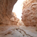 Vous rêvez d’évasion, de grands espaces et de rencontres authentiques ? Nous aussi ! La Tunisie, avec ses dunes ocres, ses plateaux luna­ires et ses sentiers côtiers parfumés de thym, est un terrain de jeu idéal pour les amoureux de la marche. Dans ce guide ultra-complet, nous partageons tous nos bons plans pour que votre prochaine randonnée en Tunisie soit inoubliable : spots incontournables, itinéraires détaillés, astuces météo, culture locale… Prenez votre gourde, on part ! Les atouts uniques de la randonnée en Tunisie D’accord, il existe mille destinations « trek » dans le monde. Mais la Tunisie, c’est un cocktail rare : un climat doux la majeure partie de l’année, une mosaïque de paysages sur un territoire compact, et surtout une hospitalité légendaire. Ici, on passe en un clin d’œil des plages méditerranéennes aux plateaux lunaires du Dahar, puis aux dunes géantes du Grand Erg Oriental. Météo avantageuse : de septembre à mai, les températures restent idéales pour marcher, même dans le Sud saharien. Accessibilité : routes asphaltées jusqu’aux portes du désert, réseau d’hébergements varié, aéroports bien desservis. Patrimoine vivant : villages troglodytes, ksour fortifiés, ruines romaines, oasis suspendues – impossible de tout voir en une seule escapade. Bref, on profite d’aventures grandeur nature sans logistique compliquée ni budget qui explose. Choisir son terrain de jeu : désert, montagne ou littoral ? La question revient souvent : « On marche où en Tunisie ? » La bonne nouvelle, c’est qu’il n’y a pas de mauvaise réponse. Tout dépend de vos envies de paysages et de votre niveau. Trekking saharien : dunes et bivouac sous les étoiles Le Sud tunisien signifie avant tout sable, silence et cieux tapissés d’étoiles. Depuis Douz, la « porte du désert », on rejoint les dunes blondes du Grand Erg Oriental. À dos de dromadaire ou à pied, le rythme lent laisse le temps d’admirer les vagues de sable qui virent du rose au rouge au coucher du soleil. Les plus aventureux prolongent jusqu’à Ksar Ghilane, oasis brûlante célèbre pour sa source chaude sulfureuse – un spa 100 % naturel au beau milieu des dunes ! Envie d’un aperçu détaillé ? Découvrez nos circuits dans le désert clés en main, testés et approuvés par des centaines de randonneurs. Randonnées montagneuses : Djebel Ressas, Zaghouan et Dahar On l’oublie souvent, mais la Tunisie possède des reliefs : Djebel Ressas (795 m), silhouette massive qui domine Tunis ; en haut, panorama à 360 ° sur la Méditerranée et le cap Bon. Djebel Zaghouan (1295 m), royaume des mouflons et du thym citronné. Les ruines du Temple des Eaux y ajoutent un parfum d’Antiquité. Plateaux du Dahar, dans le Sud-Est : falaises ocre, villages troglodytes de Chenini et Douiret, pistes suspendues pour les mollets aguerris. Balades côtières : cap Bon, sentier des falaises et îles secrètes Pour ceux qui aiment sentir l’air marin, le nord et l’est du pays déroulent des kilomètres de croûte calcaire surplombant des criques turquoises. Du fort génois de Tabarka aux plages sauvages d’El Haouaria, on alterne baignades sauvages et points de vue Instagram-friendly. Mention spéciale pour l’île de la Galite, accessible en bateau privé depuis Bizerte : réserve naturelle, zéro voiture et sentiers bordés d’euphorbes géantes. Préparer son voyage randonnée en Tunisie : conseils pratiques Avant d’attaquer la première montée, un brin de préparation évite pas mal de galères. Voilà notre check-list : Climat et fenêtre idéale Septembre-novembre : températures modérées partout, palmiers chargés de dattes, ciels d’un bleu insolent. Décembre-février : le désert est frais la nuit (0 °C possibles), les montagnes verdissent après les pluies. Mars-mai : explosion de fleurs sauvages dans l’Atlas tunisien, dunes encore supportables avant la fournaise estivale. L’été dans le Sahara ? Mieux vaut éviter, sauf sorties très matinales… ou grosse tolérance à la chaleur. Équipement malin pour marcher léger Chaussures de trek déjà rodées (ampoules : non merci). Vêtements respirants + coupe-vent léger, même au désert ; le soir, ça pique. Buff ou cheich pour se protéger des grains de sable. Crème solaire indice 50, lunettes UV400, stick lèvres. Gourde 1,5 L minimum + pastilles de purification si vous partez en autonomie. Trousse à bobos (doliprane, désinfectant, bandes) ; la pharmacie du coin peut être à 100 km. Logistique sur place : transports et hébergements Location de voiture : pratique pour relier montagnes et littoral ; réseaux routiers en bon état. Taxis collectifs (louages) : économiques, parfaits pour joindre les grandes villes. Hébergements : on passe des hôtels de charme à Tunis aux camps nomades sous khaïmas dans le Sahara. Pensez à réserver les bivouacs en haute saison. Besoin d’un coup de main ? Remplissez notre formulaire de demande de devis voyage ; on vous prépare un itinéraire sur mesure, sans prise de tête. Itinéraires coups de cœur et idées de circuits 3 jours autour des oasis de Chebika, Tamerza et Midès Jour 1 : départ de Tozeur, piste vers Chebika, randonnée en boucle (3 h) entre palmeraie, canyon et sources fraîches. Nuit en maison d’hôte à Tamerza. Jour 2 : trek Tamerza – Midès (15 km) via l’ancien caravansérail ; pique-nique face au grand canyon. Jour 3 : descente vers Chott el-Gharsa, désert de sel immaculé ; coucher du soleil rose pastel, retour à Tozeur. Semaine saharienne : Douz → Ksar Ghilane → Zmela J1-J2 : Douz – Erg El Mhasser, immersion totale parmi les dunes géantes, bivouac (chant des chouettes du désert en fond sonore). J3-J4 : cap plein Est jusqu’à l’oasis abandonnée d’Aïn Ouadette, baignade en source sulfureuse à 37 °C. J5 : arrivée à Ksar Ghilane, fort romain de Tisavar, coucher de soleil à dos de dromadaire. J6-J7 : traversée vers le campement de Zmela, au pied des dunes blanches ; retour en 4×4 à Douz. Grande traversée du Dahar (5 jours) Chenini – Douiret – Guermessa – Matmata – Toujane. Sentiers de crêtes, villages troglodytes, nuits en gîte rural ; 70 km d’émotions brutes et de panoramas « Martiens ». S’immerger dans la culture locale en marchant Marcher, c’est aussi rencontrer. En Tunisie, chaque pause thé menthe se transforme vite en leçon de cuisine ou en débat passionné sur le meilleur couscous. N’hésitez pas à : Dormir chez l’habitant : les gîtes de Zaghouan ou de Matmata offrent un confort simple mais toujours un couscous fumant et des histoires de bergers. Participer à la cueillette des olives (novembre-décembre) ou des dattes (octobre) : vos hôtes seront ravis de partager leur savoir-faire. Apprendre quelques mots d’arabe dialectal : un « saha » (merci) ouvre mille sourires. Questions fréquentes (FAQ) sur la randonnée en Tunisie Faut-il un guide ? Pas obligatoire pour la montagne balisée, mais fortement conseillé dans le désert : orientation complexe, météo changeante. Quel budget prévoir ? Comptez 40–60 €/jour en autonomie (hébergement simple + nourriture), 90–120 €/jour pour un trek saharien encadré avec logistique complète. Formalités ? Pour la plupart des nationalités européennes, passeport valide 3 mois après la date de retour et séjour ≤ 90 jours sans visa. Sécurité Les zones de randonnée classiques sont stables et surveillées. On évite simplement les zones militaires frontalières (généralement signalées). Conclusion : prêts à chausser vos bottes ? Le Sahara infini, les sentiers vertigineux du Dahar, l’odeur du pain tabouna qui cuit au feu de bois… La randonnée en Tunisie n’est pas qu’un sport : c’est une plongée sensorielle et humaine hors du temps. Alors, on se retrouve bientôt sur les pistes ? Pour une organisation sans stress, remplissez votre demande de devis en deux clics. Et si l’aventure vous a plu, pensez à partager vos impressions et vos plus belles photos sur notre page TripAdvisor : https://www.tripadvisor.fr/Attraction_Review-g293757-d31317516-Reviews-Sud_Tunisie-Tozeur_Tozeur_Governorate.html. Vos retours inspireront les futurs randonneurs ! À très vite, sous le soleil de Tunisie.