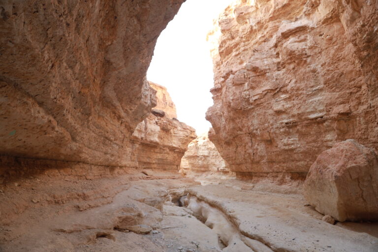 Vous rêvez d’évasion, de grands espaces et de rencontres authentiques ? Nous aussi ! La Tunisie, avec ses dunes ocres, ses plateaux luna­ires et ses sentiers côtiers parfumés de thym, est un terrain de jeu idéal pour les amoureux de la marche. Dans ce guide ultra-complet, nous partageons tous nos bons plans pour que votre prochaine randonnée en Tunisie soit inoubliable : spots incontournables, itinéraires détaillés, astuces météo, culture locale… Prenez votre gourde, on part ! Les atouts uniques de la randonnée en Tunisie D’accord, il existe mille destinations « trek » dans le monde. Mais la Tunisie, c’est un cocktail rare : un climat doux la majeure partie de l’année, une mosaïque de paysages sur un territoire compact, et surtout une hospitalité légendaire. Ici, on passe en un clin d’œil des plages méditerranéennes aux plateaux lunaires du Dahar, puis aux dunes géantes du Grand Erg Oriental. Météo avantageuse : de septembre à mai, les températures restent idéales pour marcher, même dans le Sud saharien. Accessibilité : routes asphaltées jusqu’aux portes du désert, réseau d’hébergements varié, aéroports bien desservis. Patrimoine vivant : villages troglodytes, ksour fortifiés, ruines romaines, oasis suspendues – impossible de tout voir en une seule escapade. Bref, on profite d’aventures grandeur nature sans logistique compliquée ni budget qui explose. Choisir son terrain de jeu : désert, montagne ou littoral ? La question revient souvent : « On marche où en Tunisie ? » La bonne nouvelle, c’est qu’il n’y a pas de mauvaise réponse. Tout dépend de vos envies de paysages et de votre niveau. Trekking saharien : dunes et bivouac sous les étoiles Le Sud tunisien signifie avant tout sable, silence et cieux tapissés d’étoiles. Depuis Douz, la « porte du désert », on rejoint les dunes blondes du Grand Erg Oriental. À dos de dromadaire ou à pied, le rythme lent laisse le temps d’admirer les vagues de sable qui virent du rose au rouge au coucher du soleil. Les plus aventureux prolongent jusqu’à Ksar Ghilane, oasis brûlante célèbre pour sa source chaude sulfureuse – un spa 100 % naturel au beau milieu des dunes ! Envie d’un aperçu détaillé ? Découvrez nos circuits dans le désert clés en main, testés et approuvés par des centaines de randonneurs. Randonnées montagneuses : Djebel Ressas, Zaghouan et Dahar On l’oublie souvent, mais la Tunisie possède des reliefs : Djebel Ressas (795 m), silhouette massive qui domine Tunis ; en haut, panorama à 360 ° sur la Méditerranée et le cap Bon. Djebel Zaghouan (1295 m), royaume des mouflons et du thym citronné. Les ruines du Temple des Eaux y ajoutent un parfum d’Antiquité. Plateaux du Dahar, dans le Sud-Est : falaises ocre, villages troglodytes de Chenini et Douiret, pistes suspendues pour les mollets aguerris. Balades côtières : cap Bon, sentier des falaises et îles secrètes Pour ceux qui aiment sentir l’air marin, le nord et l’est du pays déroulent des kilomètres de croûte calcaire surplombant des criques turquoises. Du fort génois de Tabarka aux plages sauvages d’El Haouaria, on alterne baignades sauvages et points de vue Instagram-friendly. Mention spéciale pour l’île de la Galite, accessible en bateau privé depuis Bizerte : réserve naturelle, zéro voiture et sentiers bordés d’euphorbes géantes. Préparer son voyage randonnée en Tunisie : conseils pratiques Avant d’attaquer la première montée, un brin de préparation évite pas mal de galères. Voilà notre check-list : Climat et fenêtre idéale Septembre-novembre : températures modérées partout, palmiers chargés de dattes, ciels d’un bleu insolent. Décembre-février : le désert est frais la nuit (0 °C possibles), les montagnes verdissent après les pluies. Mars-mai : explosion de fleurs sauvages dans l’Atlas tunisien, dunes encore supportables avant la fournaise estivale. L’été dans le Sahara ? Mieux vaut éviter, sauf sorties très matinales… ou grosse tolérance à la chaleur. Équipement malin pour marcher léger Chaussures de trek déjà rodées (ampoules : non merci). Vêtements respirants + coupe-vent léger, même au désert ; le soir, ça pique. Buff ou cheich pour se protéger des grains de sable. Crème solaire indice 50, lunettes UV400, stick lèvres. Gourde 1,5 L minimum + pastilles de purification si vous partez en autonomie. Trousse à bobos (doliprane, désinfectant, bandes) ; la pharmacie du coin peut être à 100 km. Logistique sur place : transports et hébergements Location de voiture : pratique pour relier montagnes et littoral ; réseaux routiers en bon état. Taxis collectifs (louages) : économiques, parfaits pour joindre les grandes villes. Hébergements : on passe des hôtels de charme à Tunis aux camps nomades sous khaïmas dans le Sahara. Pensez à réserver les bivouacs en haute saison. Besoin d’un coup de main ? Remplissez notre formulaire de demande de devis voyage ; on vous prépare un itinéraire sur mesure, sans prise de tête. Itinéraires coups de cœur et idées de circuits 3 jours autour des oasis de Chebika, Tamerza et Midès Jour 1 : départ de Tozeur, piste vers Chebika, randonnée en boucle (3 h) entre palmeraie, canyon et sources fraîches. Nuit en maison d’hôte à Tamerza. Jour 2 : trek Tamerza – Midès (15 km) via l’ancien caravansérail ; pique-nique face au grand canyon. Jour 3 : descente vers Chott el-Gharsa, désert de sel immaculé ; coucher du soleil rose pastel, retour à Tozeur. Semaine saharienne : Douz → Ksar Ghilane → Zmela J1-J2 : Douz – Erg El Mhasser, immersion totale parmi les dunes géantes, bivouac (chant des chouettes du désert en fond sonore). J3-J4 : cap plein Est jusqu’à l’oasis abandonnée d’Aïn Ouadette, baignade en source sulfureuse à 37 °C. J5 : arrivée à Ksar Ghilane, fort romain de Tisavar, coucher de soleil à dos de dromadaire. J6-J7 : traversée vers le campement de Zmela, au pied des dunes blanches ; retour en 4×4 à Douz. Grande traversée du Dahar (5 jours) Chenini – Douiret – Guermessa – Matmata – Toujane. Sentiers de crêtes, villages troglodytes, nuits en gîte rural ; 70 km d’émotions brutes et de panoramas « Martiens ». S’immerger dans la culture locale en marchant Marcher, c’est aussi rencontrer. En Tunisie, chaque pause thé menthe se transforme vite en leçon de cuisine ou en débat passionné sur le meilleur couscous. N’hésitez pas à : Dormir chez l’habitant : les gîtes de Zaghouan ou de Matmata offrent un confort simple mais toujours un couscous fumant et des histoires de bergers. Participer à la cueillette des olives (novembre-décembre) ou des dattes (octobre) : vos hôtes seront ravis de partager leur savoir-faire. Apprendre quelques mots d’arabe dialectal : un « saha » (merci) ouvre mille sourires. Questions fréquentes (FAQ) sur la randonnée en Tunisie Faut-il un guide ? Pas obligatoire pour la montagne balisée, mais fortement conseillé dans le désert : orientation complexe, météo changeante. Quel budget prévoir ? Comptez 40–60 €/jour en autonomie (hébergement simple + nourriture), 90–120 €/jour pour un trek saharien encadré avec logistique complète. Formalités ? Pour la plupart des nationalités européennes, passeport valide 3 mois après la date de retour et séjour ≤ 90 jours sans visa. Sécurité Les zones de randonnée classiques sont stables et surveillées. On évite simplement les zones militaires frontalières (généralement signalées). Conclusion : prêts à chausser vos bottes ? Le Sahara infini, les sentiers vertigineux du Dahar, l’odeur du pain tabouna qui cuit au feu de bois… La randonnée en Tunisie n’est pas qu’un sport : c’est une plongée sensorielle et humaine hors du temps. Alors, on se retrouve bientôt sur les pistes ? Pour une organisation sans stress, remplissez votre demande de devis en deux clics. Et si l’aventure vous a plu, pensez à partager vos impressions et vos plus belles photos sur notre page TripAdvisor : https://www.tripadvisor.fr/Attraction_Review-g293757-d31317516-Reviews-Sud_Tunisie-Tozeur_Tozeur_Governorate.html. Vos retours inspireront les futurs randonneurs ! À très vite, sous le soleil de Tunisie.