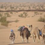 Pourquoi randonner dans le Sud ? Un désert pas comme les autres À première vue, le Sahara tunisien évoque des dunes infinies et un soleil ardent. Pourtant, nous découvrons vite qu’il recèle mille visages : plaines lunaires du Grand Erg Oriental, oasis verdoyantes nichées entre falaises, lacs salés miroitants et ksour perchés qui défient le temps. Randonner ici, c’est renouer avec l’essentiel : le silence, la beauté brute et la chaleur d’un accueil authentique. Chez sudtunisie.com, nous avons donc conçu un ensemble de circuits privés mêlant marche douce, trajets 4×4 et rencontres locales, pour savourer chaque nuance de ce territoire hors normes. Avant même de chausser vos bottes, vous sentirez déjà l’odeur du pain de sable, de la menthe fraîche et du bois d’acacia qui crépite sous les étoiles. Notre concept de circuit privé : liberté, confort et immersion Nous pensons qu’un vrai voyage commence lorsque l’on suit son propre rythme. C’est pourquoi chaque itinéraire est 100 % modulable : vous choisissez la durée, l’allure, les haltes photos, voire le nombre de kilomètres de marche quotidienne. Transport exclusif : 4×4 climatisé, chauffeur-guide francophone, logistique bagages indépendante pour marcher léger. Hébergements variés : nuit sous tente nomade, lodge de charme face au Chott el Jerid, chambre d’hôtes troglodyte à Matmata ou écolodge au pied des dunes rouges de Ksar Ghilane. Cuisine maison : couscous à la gargoulette, méchoui d’agneau au feu de bois, chakchouka aux œufs fermiers… préparée sur place par notre équipe. Flexibilité absolue : séance astro à minuit ? Lever de soleil depuis la crête d’une erg isolée ? Hammam traditionnel à Douz ? Nous intégrons vos envies. Pour découvrir l’éventail complet de nos propositions, faites un saut sur notre page circuits désert, vous y trouverez inspirations et conseils détaillés. Itinéraire détaillé : 7 jours inoubliables entre oasis, dunes et villages berbères Jour 1 — Tozeur, porte des merveilles Nous vous accueillons à Tozeur où palmeraies et façades en briques géométriques composent un décor déjà dépaysant. Après un café maure, cap sur l’oasis de Chebika : cascade, bassin turquoise et senteur de jasmin. Marche tranquille d’une heure avant de rejoindre Tamerza et ses gorges vertigineuses. Dîner sur toit-terrasse face au canyon. Jour 2 — Chott el Jerid & Ksar Ghilane Au petit matin, traversée du Chott : 5 000 km² de sel scintillant, mirages saisissants. Arrêts photos, possible rencontre avec les sauniers. Puis piste saharienne vers Ksar Ghilane, oasis aux eaux thermales. Randonnée chamelière au coucher du soleil : 8 km dans un silence de velours. Bivouac sous tente khaïma, feu de camp et légendes touaregs. Jour 3 — Dunes rouges et fort romain Ascension matinale d’une mer de dunes couleur ocre pour admirer l’erg qui ondule jusqu’en Libye. Visite des ruines du fort Tisavar, témoignage de la présence romaine. Déjeuner méchoui. Après-midi 4×4 vers la “route sans fin” qui mène à Douz. Soirée folklore Mzabi dans une auberge familiale. Jour 4 — Douz, la palmeraie blanche Randonnée palmée : 12 km sous les palmiers dattiers, découverte des canaux d’irrigation et dégustation de deglet nour fraîche. Marché aux dromadaires, ateliers de tissage des tapis klims. Nuit en maison d’hôtes décorée de nattes et poteries. Jour 5 — Montagne & troglodytes de Matmata Route panoramique jusqu’aux crêtes du Dahar : paysages striés, canyons, pitons. Halte dans un village troglodyte où l’on visite un foyer creusé dans l’argile. Balade “balcons du désert” sur sentier muletier. Dîner sous coupole berbère : couscous “sfouf” aux légumes du potager. Jour 6 — Chenini, ksar légendaire Nous accédons à Chenini par un escalier rocheux. Le ksar domine les plaines couleur miel. Rencontre avec l’imam gardien des sept dormants, sieste dans un grenier séculaire réhabilité. Marche douce sur la piste lunaire reliant Douiret : 10 km, ombres longues, silence minéral. Nuit en gîte d’étape, thé à la sauge. Jour 7 — Nefta & retour Réveil en douceur, route vers Nefta, la “Corbeille” d’Algiza. Promenade dans les jardins denses, visite d’une huilerie de palme, dernier déjeuner de brick à l’œuf. Transfert aéroport Tozeur, souvenirs plein la tête et sable dans les chaussures ! Expériences signatures : plus qu’une simple marche Balade astro sous la Voie lactée Grâce à notre télescope portatif, nous décodons les constellations sahariennes. Contes amazighs, chute d’étoiles filantes et silence absolu : moment suspendu. Atelier pain de sable Farine, eau, sel : la pâte est enterrée dans la braise, recouverte de sable brûlant. Quinze minutes plus tard, vous rompez un pain croustillant, servi avec huile d’olive et harissa maison. Cours de percussion berbère Au bivouac, notre musicien vous initie au bendir. Vous repartez avec le rythme du désert dans la peau. Plongée dans l’artisanat Poterie de Sejnane classée UNESCO, tissage de foutas, vannerie en alfa : chaque halte est l’occasion d’acheter directement aux artisans, loin des circuits touristiques traditionnels. Conseils pratiques pour une randonnée sans souci Période idéale : mars-avril et octobre-novembre. Températures comprises entre 18 °C la nuit et 28 °C le jour. Équipement : chaussures de trek montantes, foulard multifonction, veste coupe-vent légère, crème solaire SPF 50, sac à dos 30 L, gourde 1,5 L réutilisable. Forme physique : nos parcours s’adaptent aux marcheurs occasionnels comme aux sportifs. Nous prévoyons toujours un véhicule de soutien pour pallier la fatigue. Santé : pas de vaccination obligatoire. Trousse individuelle : paracétamol, pansements ampoules, antihistaminique, gel hydroalcoolique. Formalités : passeport valable six mois après retour, pas de visa pour la plupart des nationalités européennes. Assurance : une couverture assistance-rapatriement est incluse, mais nous recommandons une extension bagages et annulation. Choisir sudtunisie.com : nos garanties, vos certitudes Expertise terrain Basés à Tozeur depuis 15 ans, nous sillonnons chaque piste avant de la proposer. Nos guides sont formés au secourisme et parlent français, anglais, parfois allemand ou italien. Engagement éco-responsable Nous limitons l’usage de plastiques, favorisons les fournisseurs locaux et soutenons des projets d’irrigation dans deux oasis partenaires. Un euro par voyageur est reversé au fonds Palmeraie durable. Avis clients authentiques Plus de 450 voyageurs ont déjà laissé leur empreinte sur notre page TripAdvisor. Lisez leurs témoignages ici : Sud Tunisie sur TripAdvisor. Transparence totale, photos non retouchées, récits d’aventure touchants. Devis rapide et clair Envie de personnaliser votre trekking ? Nous répondons sous 24 h. Demandez votre devis sur mesure via notre formulaire de contact. Pas de frais cachés, paiement sécurisé, possibilité d’échelonner. FAQ express Combien de kilomètres marche-t-on par jour ? En moyenne 8 à 12 km, adaptables. Faut-il être un trekkeur chevronné ? Non : le véhicule logistique suit à distance. Si vous souhaitez seulement quelques heures de marche et plus de 4×4, c’est faisable. Les repas sont-ils adaptés aux végétariens ? Bien sûr ! Nous proposons couscous aux légumes, tajine œufs-pommes de terre, bricks aux épinards, etc. Existe-t-il des circuits famille ? Oui, dès 6 ans : chasses au trésor dans les dunes, promenade à dos d’âne dans l’oasis et initiation à l’astronomie. Conclusion : votre prochaine grande aventure commence ici Marcher dans le Sahara tunisien, c’est goûter à l’infini, entre dunes dorées, oasis secrètes et ciel piqué d’étoiles. Avec nos circuits privés, vous mêlez confort, rencontres sincères et défis physiques dosés à votre convenance. Nous mettons tout notre savoir-faire et notre passion au service de votre voyage. Alors, prêts à tracer votre propre piste ? Contactez-nous sans tarder et laissons le vent du désert écrire votre histoire.