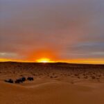 Le Sahara tunisien, c’est un océan de dunes dorées, des oasis secrètes, des ksour perchés et surtout des rencontres qui laissent une trace indélébile. Nous avons sillonné ces étendues pour façonner des circuits privés qui vont bien au-delà de la simple balade en 4×4. Ici, chaque grain de sable raconte une histoire, chaque escale révèle un trésor culturel, et chaque soirée sous la voûte céleste transforme le voyage en souvenir impérissable. Pourquoi choisir un circuit privé dans le Sahara ? D’abord, la liberté : pas d’horaires imposés par un groupe. Nous adaptons l’itinéraire à votre rythme, vos envies d’aventure ou de détente. Ensuite, la proximité : un guide francophone dédié, prêt à partager anecdotes, légendes et conseils pratiques. Enfin, le confort : véhicules tout-terrain récents, climatisés, équipés pour affronter pistes sablonneuses et regs caillouteux sans sacrifier la fraîcheur d’une boisson à bord. Nos avantages clés : Flexibilité totale sur les horaires de départ, la durée des pauses et les activités optionnelles (balade à dos de dromadaire, survol en montgolfière, initiation au quad, atelier de cuisine locale…). Accès VIP à des campements premium, loin des foules, où seules les flammes des lanternes éclairent la nuit saharienne. Cuisine authentique concoctée par nos cuisiniers nomades : couscous aux légumes du jardin oasien, méchoui cuit dans le sable chaud, et bien sûr le fameux « pain de sable » enfoui sous les braises. Itinéraire détaillé : nos incontournables du Sud 1. Douz, la Porte du Désert Votre aventure démarre à Douz, petite bourgade où le marché aux dromadaires rythme encore les jeudis. Après un thé à la menthe, nous embarquons vers l’Erg Oriental. Les premières dunes se dressent majestueuses ; le silence se fait, seulement brisé par le crissement des pneus dans le sable. 2. Ksar Ghilane, l’oasis mythique En fin d’après-midi, apparition d’une tâche verte : Ksar Ghilane. Palmiers dattiers, source thermale naturelle à 32 °C, remparts d’un fort romain – parfait pour un bain relaxant avant de savourer un tajine fumant. Nuit en tente berbère, matelas épais, couvertures chaudes, douche privative : l’aventure, oui, mais sans compromis sur le confort. 3. Matmata et ses maisons troglodytes Cap au nord-est, pistes de reg ponctuées d’acacias parasols. À Matmata, nous descendons dans les habitations creusées dans la roche. Aïcha vous accueille chez elle ; café turc à la main, elle raconte comment la fraîcheur naturelle des parois protège la famille des 45 °C en été. Vous pourrez même pétrir la pâte du pain tabouna avant de la coller aux parois du four en terre. 4. Tataouine, Chenini et les Ksour suspendus « Vers Tataouine », ce n’est pas qu’une réplique de film : c’est un voyage entre canyons, silos à grains fortifiés et villages perchés. À Chenini, les ruelles s’accrochent à la falaise ; le muezzin appelle, l’écho se répercute sur les rochers ocre. Panorama époustouflant garanti. 5. Tamerza, Chebika et Midès : oasis de montagne Changement de décor : gorges verdoyantes, cascades cristallines et palmeraies suspendues. Randonnée facile entre canyons et points de vue dignes d’une carte postale. Parfait pour se rafraîchir avant de regagner les sables chauds. 6. Ong Jmel et le Chott el-Jérid Dernière matinée sur les traces de Luke Skywalker : le décor lunaire d’Ong Jmel et les mirages scintillants du Chott el-Jérid. Le sel craque sous les pas, et quand le soleil décline, il peint le désert de couleurs pastels incroyables. Pour consulter l’ensemble de nos propositions, jetez un œil à notre sélection complète de circuits désert : chaque programme est 100 % personnalisable. Immersion authentique : rencontres et expériences locales Partage avec les nomades Nous aimons créer des ponts. Dans le campement, Salah et sa famille montent la tente khima traditionnelle, tressent les fibres de palmier, jouent du bendir autour du feu. Vous apprenez quelques mots en dialecte, goûtez au lait de chamelle frais, et, si la chance est avec vous, vous assistez à une danse « raqs el-beldi » improvisée. Saveurs du désert “Lab’labi” revisité : soupe de pois chiches parfumée au cumin, idéale après une nuit fraîche. Dattes Deglet Nour fourrées à la pâte d’amande, récoltées le matin même. Thé vert aux pignons grillés, servi à la manière maghrébine, théière tenue en hauteur pour mousser la boisson. Artisanat et savoir-faire Au village de Toujane, Farhat travaille le tapis mergoum ; ses doigts volent sur le métier à tisser. Vous repartez peut-être avec un petit coussin brodé, mais surtout avec l’histoire d’un motif transmis de mère en fille depuis des siècles. Logistique et confort : 4×4, guides et campements premium Nos 4×4 Toyota Land Cruiser ou Nissan Patrol sont révisés après chaque circuit : pneus sable, compresseur embarqué, trousse de premiers secours. Les chauffeurs-guides, tous natifs du Sud, détiennent les licences professionnelles et parlent français (et souvent anglais ou allemand). Nous limitons à quatre voyageurs par véhicule pour garantir l’espace et la visibilité. Côté hébergement, trois catégories : Campement charme : tentes privées, sanitaires partagés, lumière solaire. Campement premium : suites sous toile, salle de bains intégrée, terrasse privative pour contempler l’aube. Lodge oasis : chambres climatisées, piscine d’eau de source, wifi (parce que, même au milieu du désert, on aime partager un cliché). Conseils pratiques pour un voyage sans soucis Meilleure période : octobre à avril ; journées douces (20-28 °C) et nuits fraîches (8-15 °C). L’été reste possible pour les aficionados de chaleur sèche, mais nous ajustons alors les activités aux heures fraîches. Bagages : sacs souples (meilleure tenue dans le coffre), foulard pour protéger visage et appareil photo du sable, lunettes de soleil indice 4, crème solaire haute protection. Santé : pas de vaccin obligatoire. Pensez à une petite trousse avec antihistaminiques, pansements, solution antiseptique. Monnaie : le dinar tunisien (TND). Des distributeurs existent à Douz et à Tataouine, mais inutile d’emporter des tonnes d’espèces : nous pouvons inclure presque tout dans le forfait, hors souvenirs. Respect culturel : tenue décente dans les villages (épaules couvertes), demander l’autorisation avant de photographier les habitants. Réserver votre aventure : comment procéder ? Un simple pas pour vous, un grand bond vers l’aventure ! Remplissez le formulaire « Devis gratuit Sahara » sur cette page : demander un devis personnalisé. Nous revenons vers vous sous 24 h chrono avec : Un programme sur-mesure, détaillant chaque étape, activité, et repas. Une grille tarifaire claire (pas de frais cachés). Des options « plus » : photographe pro, yoga au lever du soleil, soirée astronomique avec télescope. Une fois le devis validé, un acompte sécurise vos dates. Le solde ? Le jour du départ, directement à Douz ou Tozeur. Paiement par carte, virement ou cash, comme vous préférez. Ils nous ont fait confiance : témoignages & avis Nos voyageurs en parlent mieux que nous ! Sur TripAdvisor, Sud Tunisie affiche fièrement cinq étoiles : randonnées chamelières inoubliables, logistique fluide, guides chaleureux. Lisez quelques retours ici : voir les avis sur TripAdvisor et rejoignez-nous pour écrire la prochaine belle histoire. « Une organisation au top ! Nous avons dormi sous un million d’étoiles, dégusté un couscous exceptionnel et surtout senti la vraie âme du désert. » — Claire & Julien, Lyon « Le guide Salah connaît chaque dune comme sa poche. On se sentait en sécurité et totalement dépaysés. » — David, Bruxelles FAQ express Combien de jours pour un premier désert ? Trois à cinq jours permettent déjà une expérience complète : dunes, oasis, ksour et retour sans rush. Faut-il une condition physique particulière ? Non ; nos circuits s’adaptent. Les marches sur les dunes restent modulables, et un 4×4 reste toujours à portée. Les enfants peuvent-ils participer ? Oui ! Nous ajustons la durée de route, prévoyons jeux de piste, atelier de fabrication de briques de sable et mini‐balade en dromadaire. Quid des options haut de gamme ? Vol en hélicoptère sur le Grand Erg, dîner gastronomique signé par un chef tozeurien, spa hammam dans l’oasis. Demandez-nous ! Le désert, c’est dangereux ? Avec un opérateur local expérimenté, non. Nos véhicules sont géolocalisés, nos guides formés aux premiers secours, et nous suivons la météo dune par dune (vent, visibilité, température). Dans ce royaume de sable, chaque lever de soleil embrase l’horizon comme un tableau vivant. Nous croyons que voyager, c’est tisser des liens : avec la nature, les habitants, mais aussi avec soi-même. Le Sahara tunisien n’est pas qu’un décor, c’est un personnage principal qui vous parle, vous éveille et vous recentre. Alors, prêt à écrire votre propre chapitre au cœur des dunes ? Nous, oui. Et il nous tarde de vous accueillir.