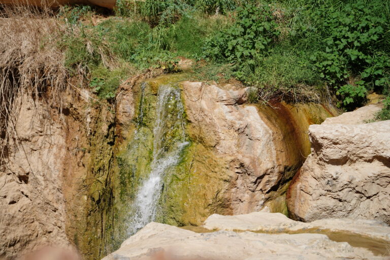 La Tunisie regorge de destinations fabuleuses pour les passionnés de nature et de marche. Pourtant, parmi tous les lieux connus, Zaghouan reste encore un secret bien gardé, loin des foules touristiques. Située à seulement 60 km de Tunis, cette région montagneuse est un vrai paradis pour les amateurs de randonnée, de patrimoine et de paysages spectaculaires. Nous vous invitons à découvrir tout ce que la randonnée à Zaghouan en Tunisie a à offrir : entre sentiers escarpés, ruines antiques, sources naturelles et rencontres inoubliables. Zaghouan : un joyau au pied de la montagne Niché au cœur du nord-est tunisien, Zaghouan est dominé par le Jebel Zaghouan, une montagne qui culmine à 1295 mètres d’altitude. Dès qu’on arrive dans la région, on est frappés par le contraste entre la végétation luxuriante, les falaises calcaires et les villages pittoresques accrochés aux pentes. Le centre-ville de Zaghouan est charmant, avec ses ruelles bordées d’oliviers, son vieux souk et ses maisons blanches aux volets bleus. Mais c’est surtout sa situation géographique qui attire les amoureux de randonnée. C’est ici que commence l’un des sentiers les plus mythiques du pays : le chemin de l’aqueduc romain, qui relie Zaghouan à Carthage, sur plus de 130 km ! Les plus belles randonnées à faire autour de Zaghouan 1. Le Temple des Eaux et la Source de l’Aqueduc C’est ici que tout commence. À la sortie de la ville, niché au pied de la montagne, se trouve le Temple des Eaux, un site romain remarquable construit au IIe siècle. C’est depuis cette source que partait l’immense aqueduc qui alimentait Carthage. Le site est paisible, entouré de cyprès et de pins, avec une vue imprenable sur la vallée. Nous vous conseillons de démarrer votre randonnée ici, en suivant les premières arches de l’aqueduc, certaines encore debout, d’autres à peine visibles sous les herbes hautes. C’est une balade de 2 à 3 heures aller-retour, facile et accessible à tous. 2. Le Jebel Zaghouan : ascension jusqu’au sommet Pour les randonneurs aguerris, l’ascension du Jebel Zaghouan est un défi magnifique. Le sentier grimpe rapidement à travers des forêts de pins, des plateaux rocheux et des zones plus exposées. La montée dure entre 4 et 5 heures, mais la récompense est incroyable : une vue panoramique sur le Sahel tunisien, la Méditerranée par temps clair, et tout le gouvernorat de Zaghouan en contrebas. En chemin, on croise souvent des bergers, des bouquetins, et même des sangliers dans les zones boisées. Prévoyez de bonnes chaussures, beaucoup d’eau et de quoi pique-niquer au sommet ! 3. Le Circuit des villages berbères de Djebel Oust Moins connu mais tout aussi fascinant, le secteur de Djebel Oust, au nord de Zaghouan, offre un réseau de sentiers entre collines et vallons, parfait pour des randonnées à la journée. On y découvre des villages traditionnels berbères, des oliveraies, des sources naturelles et des panoramas superbes sur la montagne. Ici, le rythme est lent, l’accueil chaleureux, et les paysages changent à chaque tournant. L’authenticité de la vie rurale tunisienne y est encore bien présente. Pourquoi choisir Zaghouan pour une randonnée en Tunisie ? On pourrait vous parler pendant des heures de la beauté du site, mais ce qui fait vraiment la différence, c’est l’ambiance unique de Zaghouan. Ce n’est pas juste un décor naturel, c’est un lieu vivant, habité, où l’histoire, la culture et la nature se mélangent parfaitement. La région est encore préservée du tourisme de masse, ce qui garantit une immersion authentique, loin des circuits classiques. On marche ici pour ressentir, pour respirer, pour se reconnecter. Le silence des montagnes, le chant des oiseaux, l’odeur du thym sauvage… tout contribue à créer une expérience inoubliable. Et puis, Zaghouan est aussi un point de départ idéal pour explorer le centre et le sud tunisien. Pourquoi ne pas enchaîner votre randonnée avec un circuit dans le désert, par exemple ? 👉 Découvrez nos circuits dans le désert tunisien Des conseils pratiques pour réussir votre randonnée à Zaghouan Voici nos recommandations pour profiter pleinement de votre aventure : Quand partir ? Les meilleures saisons sont le printemps (mars à mai) et l’automne (septembre à novembre). Les températures sont douces et les sentiers fleuris. Équipement indispensable : chaussures de randonnée, sac à dos avec eau (minimum 2 litres), protection solaire, chapeau, trousse de secours, et un coupe-vent léger. Sécurité : même si les sentiers sont balisés, il est conseillé de partir accompagné, surtout pour les randonnées longues. Des guides locaux sont disponibles. Respect de la nature : pas de déchets, pas de feu, et on reste sur les sentiers. La nature tunisienne est belle mais fragile. Et si vous souhaitez organiser une randonnée encadrée avec un guide professionnel, transport et repas inclus, nous vous invitons à faire une demande ici 👉 Demandez votre devis personnalisé Un patrimoine historique et naturel à préserver Ce qui rend Zaghouan unique, c’est aussi son patrimoine historique exceptionnel. Le Temple des Eaux est l’un des vestiges romains les mieux conservés du pays. Les villages alentours conservent une architecture traditionnelle rare, et la culture berbère y est encore bien vivante. En vous promenant dans les ruelles ou en discutant avec les habitants, vous découvrirez des récits de l’époque ottomane, des légendes locales, et des coutumes encore pratiquées aujourd’hui. Cette richesse immatérielle est un trésor que nous devons tous préserver. C’est pour cela que la randonnée à Zaghouan n’est pas qu’une activité de plein air, c’est un acte de découverte et de respect, une façon de voyager autrement, plus lentement, plus profondément. Ils l’ont fait, ils ont adoré : les témoignages des voyageurs Des dizaines de marcheurs, de familles et d’amoureux de la nature ont déjà tenté l’expérience à Zaghouan. Leurs mots reviennent souvent : calme, beauté, accueil, authenticité. “Une randonnée entre ciel et terre, loin du bruit, proche des étoiles.” “On ne s’attendait pas à un tel spectacle. C’est la plus belle surprise de notre voyage en Tunisie.” “Merci aux guides, à la famille qui nous a accueillis pour le déjeuner, et à la montagne pour ce silence incroyable.” Vous aussi, partagez votre expérience ou lisez les commentaires ici 👉 Voir les avis sur TripAdvisor Conclusion : Zaghouan, un écrin de nature à explorer sans attendre La randonnée à Zaghouan en Tunisie, c’est bien plus qu’une simple marche. C’est une immersion dans une nature préservée, un voyage à travers l’histoire romaine, une rencontre avec les traditions berbères, et un retour à l’essentiel. Que vous soyez débutant ou passionné de trek, vous trouverez ici le sentier qui vous ressemble, dans un cadre magnifique et apaisant. Alors, prêts à enfiler vos chaussures, à respirer l’air pur du Djebel Zaghouan et à vivre une aventure inoubliable ? Nous, on vous y attend.