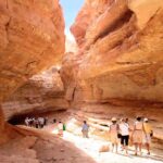 La Tunisie, avec ses paysages variés, est une terre de contrastes où se mêlent la mer, la montagne et surtout l’immensité du désert. Un circuit dans le sud tunisien est une expérience unique, une immersion totale dans l’univers fascinant du Sahara. Avec sudtunisie.com, nous vous proposons des circuits et randonnées inoubliables pour découvrir la magie des dunes, les villages berbères et les oasis secrètes. Un voyage au cœur du Sahara : immersion et authenticité Un circuit saharien, ce n’est pas seulement une excursion, c’est une véritable aventure humaine et culturelle. Le Sahara tunisien fascine par sa beauté brute et ses étendues infinies de sable doré. Chaque étape vous rapproche de l’âme du désert, de son silence apaisant et de la chaleur de ses habitants. En parcourant les pistes, on croise des caravanes, des campements nomades et des paysages changeants : dunes, plateaux rocailleux, oasis verdoyantes. Le contraste entre la rudesse du désert et l’hospitalité de ceux qui y vivent rend le voyage encore plus marquant. Chez sudtunisie.com, nous concevons des itinéraires sur mesure qui permettent de combiner découvertes culturelles et moments d’aventure. Découvrez nos programmes détaillés ici : circuits désert en Tunisie. Étapes incontournables d’un circuit dans le sud tunisien Tozeur, entre tradition et modernité Ville emblématique du sud, Tozeur séduit par sa médina, ses briques ocre et ses immenses palmeraies. L’oasis offre un contraste saisissant entre la verdure et le désert environnant. C’est également un lieu riche en patrimoine, avec des musées et des maisons traditionnelles qui racontent l’histoire de la région. Douz, la porte du Sahara Considérée comme le point de départ idéal pour les excursions sahariennes, Douz attire par son ambiance bédouine et son marché typique. On y trouve des dromadaires, des tapis et des objets artisanaux. C’est ici que débutent les grandes traversées du désert, que ce soit en dromadaire, en 4x4 ou en quad. Ksar Ghilane, l’oasis au milieu des dunes Parmi les plus belles oasis du Sahara, Ksar Ghilane est réputée pour son bassin naturel d’eau chaude. Après une journée d’aventure dans les dunes, un bain dans cette source est un véritable plaisir. Les campements sahariens installés à proximité offrent des soirées magiques sous les étoiles, avec des repas traditionnels et des veillées autour du feu. Tataouine et les ksour berbères La région de Tataouine est célèbre pour ses ksour, d’anciens greniers fortifiés qui servaient à stocker les récoltes. Ces constructions étonnantes témoignent d’un savoir-faire ancestral. C’est aussi dans ces paysages que de célèbres films ont été tournés, dont Star Wars. Matmata et ses maisons troglodytes À Matmata, les habitants ont creusé leurs maisons dans la roche pour se protéger de la chaleur. Ces habitations troglodytiques offrent une architecture unique au monde et permettent de plonger dans le quotidien des Berbères. Des activités variées pour tous les voyageurs Un circuit désert en Tunisie n’est pas limité aux visites de sites. Nous proposons une multitude d’activités adaptées aux envies de chacun : Randonnées en dromadaire pour vivre l’expérience traditionnelle saharienne. Excursions en 4x4 sur les pistes désertiques pour les aventuriers. Balades en quad pour une montée d’adrénaline au cœur des dunes. Dîners sous tente berbère, accompagnés de musique et de chants traditionnels. Observation des étoiles, dans un ciel pur, loin de toute pollution lumineuse. Rencontres avec les populations locales, pour partager leur hospitalité et leur culture. Chaque activité est pensée pour créer une immersion complète et laisser des souvenirs impérissables. Quand partir pour un circuit Sahara en Tunisie ? La période idéale pour un circuit dans le sud tunisien s’étend d’octobre à avril. Les températures sont alors agréables, rendant les excursions confortables. L’été, la chaleur peut être intense, mais pour ceux qui recherchent le calme absolu, c’est aussi un moment particulier où le désert dévoile une autre facette de sa beauté. Chaque saison a son charme : En hiver, les nuits fraîches permettent de profiter pleinement du ciel étoilé. Au printemps, les oasis se parent de verdure et contrastent magnifiquement avec les dunes. À l’automne, les couleurs du désert se réchauffent, offrant un cadre idéal pour la photographie. Pourquoi choisir sudtunisie.com pour votre aventure saharienne ? Nous mettons tout en œuvre pour que chaque voyageur vive une expérience authentique, sécurisée et inoubliable. Nos circuits sont conçus par des passionnés de la région qui connaissent chaque piste, chaque village et chaque secret du Sahara. Parmi nos engagements : Une organisation professionnelle, avec des guides expérimentés. Un confort adapté, que vous voyagiez en couple, en famille ou en groupe. Des itinéraires personnalisés, modulables selon vos envies. Un contact direct avec la population locale, pour des rencontres authentiques. Pour demander un devis personnalisé et organiser votre séjour, rendez-vous ici : contact pour devis désert Tunisie. Avis des voyageurs : témoignages et retours d’expérience Nos circuits laissent une empreinte forte dans la mémoire des voyageurs. Beaucoup évoquent le charme des nuits sous les étoiles, l’émotion d’un lever de soleil sur les dunes ou encore la chaleur de l’accueil des guides et habitants. Les retours mettent en avant : La qualité de l’organisation. La diversité des activités. La richesse des rencontres humaines. La beauté incomparable des paysages. Vous pouvez consulter et partager vos expériences sur Tripadvisor – Sud Tunisie. Conclusion : une aventure inoubliable au cœur du désert tunisien Un circuit et randonnée en Tunisie avec excursion Sahara est bien plus qu’un simple voyage : c’est une expérience sensorielle, culturelle et humaine qui marque à vie. Entre les oasis, les dunes, les villages berbères et les rencontres chaleureuses, chaque instant passé dans le sud tunisien devient un souvenir précieux. Avec sudtunisie.com, vous avez la garantie d’une organisation sérieuse, d’itinéraires authentiques et d’un accompagnement sur mesure. Que vous rêviez de dormir sous une tente au milieu du désert, de chevaucher un dromadaire au coucher du soleil ou de découvrir l’histoire fascinante des ksour, le Sahara tunisien n’attend que vous.