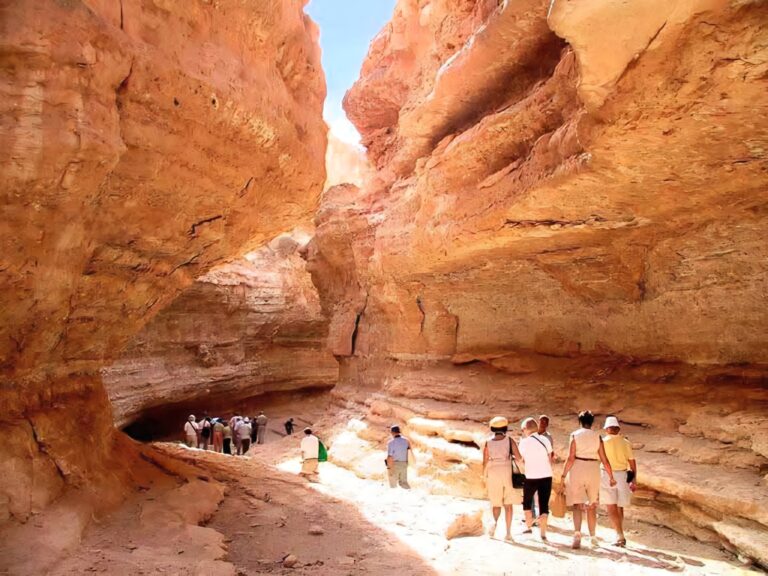 La Tunisie, avec ses paysages variés, est une terre de contrastes où se mêlent la mer, la montagne et surtout l’immensité du désert. Un circuit dans le sud tunisien est une expérience unique, une immersion totale dans l’univers fascinant du Sahara. Avec sudtunisie.com, nous vous proposons des circuits et randonnées inoubliables pour découvrir la magie des dunes, les villages berbères et les oasis secrètes. Un voyage au cœur du Sahara : immersion et authenticité Un circuit saharien, ce n’est pas seulement une excursion, c’est une véritable aventure humaine et culturelle. Le Sahara tunisien fascine par sa beauté brute et ses étendues infinies de sable doré. Chaque étape vous rapproche de l’âme du désert, de son silence apaisant et de la chaleur de ses habitants. En parcourant les pistes, on croise des caravanes, des campements nomades et des paysages changeants : dunes, plateaux rocailleux, oasis verdoyantes. Le contraste entre la rudesse du désert et l’hospitalité de ceux qui y vivent rend le voyage encore plus marquant. Chez sudtunisie.com, nous concevons des itinéraires sur mesure qui permettent de combiner découvertes culturelles et moments d’aventure. Découvrez nos programmes détaillés ici : circuits désert en Tunisie. Étapes incontournables d’un circuit dans le sud tunisien Tozeur, entre tradition et modernité Ville emblématique du sud, Tozeur séduit par sa médina, ses briques ocre et ses immenses palmeraies. L’oasis offre un contraste saisissant entre la verdure et le désert environnant. C’est également un lieu riche en patrimoine, avec des musées et des maisons traditionnelles qui racontent l’histoire de la région. Douz, la porte du Sahara Considérée comme le point de départ idéal pour les excursions sahariennes, Douz attire par son ambiance bédouine et son marché typique. On y trouve des dromadaires, des tapis et des objets artisanaux. C’est ici que débutent les grandes traversées du désert, que ce soit en dromadaire, en 4x4 ou en quad. Ksar Ghilane, l’oasis au milieu des dunes Parmi les plus belles oasis du Sahara, Ksar Ghilane est réputée pour son bassin naturel d’eau chaude. Après une journée d’aventure dans les dunes, un bain dans cette source est un véritable plaisir. Les campements sahariens installés à proximité offrent des soirées magiques sous les étoiles, avec des repas traditionnels et des veillées autour du feu. Tataouine et les ksour berbères La région de Tataouine est célèbre pour ses ksour, d’anciens greniers fortifiés qui servaient à stocker les récoltes. Ces constructions étonnantes témoignent d’un savoir-faire ancestral. C’est aussi dans ces paysages que de célèbres films ont été tournés, dont Star Wars. Matmata et ses maisons troglodytes À Matmata, les habitants ont creusé leurs maisons dans la roche pour se protéger de la chaleur. Ces habitations troglodytiques offrent une architecture unique au monde et permettent de plonger dans le quotidien des Berbères. Des activités variées pour tous les voyageurs Un circuit désert en Tunisie n’est pas limité aux visites de sites. Nous proposons une multitude d’activités adaptées aux envies de chacun : Randonnées en dromadaire pour vivre l’expérience traditionnelle saharienne. Excursions en 4x4 sur les pistes désertiques pour les aventuriers. Balades en quad pour une montée d’adrénaline au cœur des dunes. Dîners sous tente berbère, accompagnés de musique et de chants traditionnels. Observation des étoiles, dans un ciel pur, loin de toute pollution lumineuse. Rencontres avec les populations locales, pour partager leur hospitalité et leur culture. Chaque activité est pensée pour créer une immersion complète et laisser des souvenirs impérissables. Quand partir pour un circuit Sahara en Tunisie ? La période idéale pour un circuit dans le sud tunisien s’étend d’octobre à avril. Les températures sont alors agréables, rendant les excursions confortables. L’été, la chaleur peut être intense, mais pour ceux qui recherchent le calme absolu, c’est aussi un moment particulier où le désert dévoile une autre facette de sa beauté. Chaque saison a son charme : En hiver, les nuits fraîches permettent de profiter pleinement du ciel étoilé. Au printemps, les oasis se parent de verdure et contrastent magnifiquement avec les dunes. À l’automne, les couleurs du désert se réchauffent, offrant un cadre idéal pour la photographie. Pourquoi choisir sudtunisie.com pour votre aventure saharienne ? Nous mettons tout en œuvre pour que chaque voyageur vive une expérience authentique, sécurisée et inoubliable. Nos circuits sont conçus par des passionnés de la région qui connaissent chaque piste, chaque village et chaque secret du Sahara. Parmi nos engagements : Une organisation professionnelle, avec des guides expérimentés. Un confort adapté, que vous voyagiez en couple, en famille ou en groupe. Des itinéraires personnalisés, modulables selon vos envies. Un contact direct avec la population locale, pour des rencontres authentiques. Pour demander un devis personnalisé et organiser votre séjour, rendez-vous ici : contact pour devis désert Tunisie. Avis des voyageurs : témoignages et retours d’expérience Nos circuits laissent une empreinte forte dans la mémoire des voyageurs. Beaucoup évoquent le charme des nuits sous les étoiles, l’émotion d’un lever de soleil sur les dunes ou encore la chaleur de l’accueil des guides et habitants. Les retours mettent en avant : La qualité de l’organisation. La diversité des activités. La richesse des rencontres humaines. La beauté incomparable des paysages. Vous pouvez consulter et partager vos expériences sur Tripadvisor – Sud Tunisie. Conclusion : une aventure inoubliable au cœur du désert tunisien Un circuit et randonnée en Tunisie avec excursion Sahara est bien plus qu’un simple voyage : c’est une expérience sensorielle, culturelle et humaine qui marque à vie. Entre les oasis, les dunes, les villages berbères et les rencontres chaleureuses, chaque instant passé dans le sud tunisien devient un souvenir précieux. Avec sudtunisie.com, vous avez la garantie d’une organisation sérieuse, d’itinéraires authentiques et d’un accompagnement sur mesure. Que vous rêviez de dormir sous une tente au milieu du désert, de chevaucher un dromadaire au coucher du soleil ou de découvrir l’histoire fascinante des ksour, le Sahara tunisien n’attend que vous.