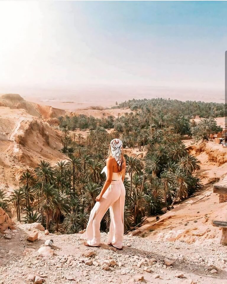 Découvrir le Sahara tunisien n’est pas un simple déplacement : c’est une immersion dans un univers de dunes dorées, de ksour millénaires et d’oasis vivantes qui réchauffent le cœur autant que la lumière du désert. Nous concevons des circuits sur mesure, des excursions privées et des transferts/ navettes dédiés qui vous emmènent, en toute sécurité et confort, au plus près de l’âme du Sud tunisien. Notre promesse : un voyage fluide, authentique et hautement personnalisé, depuis l’aéroport jusqu’au dernier coucher de soleil sur l’erg. Pourquoi choisir un circuit dans le Sud tunisien ? Le Sud tunisien concentre une richesse naturelle et culturelle exceptionnelle. Entre les chotts scintillants, les villages troglodytiques, les palmeraies de Tozeur et les dunes infinies de Douz, on traverse en quelques heures des paysages d’une diversité rare. Les amateurs de randonnée douce, de bivouac sous les étoiles ou de road trip en 4×4 y trouvent leur bonheur. Nous soignons chaque détail : choix des routes panoramiques, rythme adapté (parfaits pour les familles, couples, voyages seniors ou tribus d’amis), hébergements de caractère (maison d’hôtes, hôtel de charme, campement saharien) et rencontres avec des artisans et guides locaux qui partagent les secrets de leur terre. Pour consulter nos itinéraires phares et affiner votre idée, jetez un œil à notre page circuits désert : https://sudtunisie.com/voyage/circuits-desert . Nos circuits Sahara : inspirations 100 % désert à personnaliser Chaque voyageur a son tempo. C’est pourquoi nous proposons des bases d’itinéraires modulables, que nous adaptons ensuite à vos envies, à la saison et à votre budget. Circuit “Grand Sud Signature” (6 à 8 jours) Djerba – Matmata – Douz – Ksar Ghilane – Tembaine – Tozeur – Chebika/Tamerza – Metlaoui Points forts : villages troglodytiques de Matmata, dunes mobiles de l’erg oriental, bain thermal à Ksar Ghilane, nuit sous tente au cœur du désert, gorges et oasis de montagne (Chebika, Tamerza), balade en Lézard Rouge (si opérationnel). Pour qui ? Voyageurs en quête d’un panorama complet du Sahara et de ses abords, alternant confort et petite aventure maîtrisée. Circuit “Dunes & Étoiles” (3 à 4 jours) Tozeur – Douz – Ksar Ghilane – Campement saharien – Douz Points forts : coucher de soleil sur les dunes, dîner nomade, veillée autour du feu, observation du ciel étoilé (faible pollution lumineuse). Pour qui ? Idéal pour une première envie de Sahara, un long week-end, ou un cadeau d’anniversaire mémorable. Circuit “Racines Berbères & Ksour” (4 à 5 jours) Tataouine – Chenini – Douiret – Ksar Ouled Soltane – Ksar Hadada – Matmata Points forts : architecture berbère et greniers fortifiés (ksour), panoramas lunaires, cuisine locale généreuse. Pour qui ? Amoureux d’histoire, d’architecture et de photographie, avec marches légères et rencontres villageoises. Circuit “Oasis & Palmeraies” (2 à 3 jours) Tozeur – Nefta – Chott el Jerid – Chebika – Tamerza Points forts : sources jaillissantes, palmeraies verdoyantes, cascades dans un décor minéral, traversée du lac salé aux reflets changeants. Pour qui ? Ceux qui veulent un city-break nature depuis Tozeur ou qui combinent Sahara et balnéaire. Pour approfondir ces idées, retrouvez nos programmes détaillés ici : https://sudtunisie.com/voyage/circuits-desert . Excursions à la journée : l’essentiel du désert en version courte Pas toujours besoin d’un long séjour pour tomber amoureux du Sahara. Nos excursions d’une journée sont pensées pour saisir l’essence du Sud : “Coucher de soleil à Douz” : départ en fin d’après-midi, balade douce dans les dunes, thé à la menthe, photos dorées, retour en début de soirée. “Bain thermal à Ksar Ghilane” : route scénique, temps libre pour bain chaud dans l’oasis, option quad ou dromadaire jusqu’au fort romain, déjeuner local. “Oasis de montagne” : Chebika, Tamerza, Midès en boucle, pauses contemplation, petites marches, déjeuner terroir, retour détente. “Troglodytes & ksour” : Matmata, Chenini, Douiret, visite d’une maison troglodytique, panoramas et découvertes culinaires (pain tabouna, huile d’olive, couscous). Chaque excursion inclut guide/chauffeur, transfert privé, assistance et flexibilité sur les horaires pour s’ajuster à votre rythme. Transfert & navette privée : fluidité, sécurité, ponctualité Nous assurons des transferts privés confortables depuis/vers Tunis, Djerba (aéroport Zarzis), Tozeur, Gabès, Sfax ou toute autre ville/ gare/ aéroport en Tunisie. Voitures récentes et minivans climatisés, chauffeurs professionnels, suivi des vols pour les arrivées tardives et assistance 24/7. Navettes inter-villes : Djerba → Douz/ Ksar Ghilane, Tozeur → Tamerza, Tunis → Matmata, etc. Transferts événementiels : mariages, tournages, incentives. Transport “multi-étapes” : idéal si vous combinez balnéaire (Djerba) + Sahara (Douz, Tozeur) + patrimoine (Tataouine). Fini le casse-tête logistique : on vous attend à la sortie avec un panneau nominatif, on gère les bagages, on ajuste l’itinéraire si vous souhaitez faire un détour photo ou une pause dans un café local. Hébergements & expériences : esprit saharien sans compromis Le désert demande du respect et une organisation carrée. Nos campements sont installés par des équipes sahariennes expérimentées : tentes spacieuses, literie confortable, tapis traditionnels, sanitaires adaptés, repas chauds et petits-déjeuners généreux. En complément, nous sélectionnons : Maisons d’hôtes au charme discret, au pied des reliefs. Hôtels de caractère proches des palmeraies ou ouverts sur le chott. Tables locales pour une vraie immersion culinaire : méchoui, couscous à l’agneau, bsissa, dattes Deglet Nour, thé aux pignons. Selon vos envies, nous ajoutons des ateliers (cuisine, tissage, poterie), rencontres avec des artisans, sorties astronomie pour observer les constellations au télescope et séances photo au lever du jour quand la lumière est la plus douce. Périodes, météo, rythme : le bon tempo pour un grand oui au désert Automne et printemps : températures idéales, ciels limpides, couleurs sublimes. Hiver : nuits fraîches (prévoir veste chaude), ciels bouleversants d’étoiles. Été : possible mais conseillé en version courte, départs tôt le matin, pauses à l’ombre, hydratation vigilante. Nous ajustons toujours le rythme : temps de conduite raisonnables, micro-pauses fréquentes, hydratation et collations à bord, choix d’heures “golden hour” pour vos photos. Résultat : un voyage confortable, riche en moments forts, sans fatigue inutile. Sécurité & accompagnement : l’expertise locale comme boussole Le Sahara se parcourt avec préparation. Nous vérifions les pistes, la météo, la fréquence radio, les points de ravitaillement et nous maintenons un plan B (et parfois C) pour chaque étape. Guides/chauffeurs formés aux itinéraires désertiques. Vehicules entretenus, trousse de secours, eau et contacts d’assistance. Briefing clair avant chaque journée : distance, type de route, tenue, suggestions de photos, pauses. Vous profitez. Nous veillons au cadre. Comment réserver ? Devis clair, réponse rapide, suivi avant/pendant/après Un circuit ou une excursion vous attire ? L’étape est simple : dites-nous vos dates, votre aéroport d’arrivée, le nombre de voyageurs, vos envies (culture, dunes, oasis, troglodytes, gastronomie, astronomie, photo…), votre rythme (relax, standard, actif). Nous revenons avec un itinéraire personnalisé et un budget transparent. ➡️ Pour demander votre devis sur-mesure : https://sudtunisie.com/devis-voyage-desert-sud-tunisie-vacances-pas-cher-tunisie-sahara-tunisie . Nous restons disponibles pour ajuster les hébergements, ajouter une étape, raccourcir une journée, prévoir une surprise d’anniversaire ou préparer un voyage de noces avec petites attentions à chaque étape. Exemples d’itinéraires détaillés : du court au grand format 2 jours / 1 nuit : “Premiers pas dans l’erg” Jour 1 : arrivée à Douz ou Tozeur, transfert privé, Chott el Jerid (arrêt photo), installation au campement, balade au coucher du soleil, dîner sous les étoiles. Jour 2 : réveil matinal, lever de soleil sur les dunes, petit-déjeuner, retour via oasis, déjeuner terroir, transfert retour. 4 jours / 3 nuits : “Dunes, oasis & troglodytes” Jour 1 : Djerba → Matmata → Douz, maison troglodytique, déjeuner local, dunes de Douz. Jour 2 : Douz → Ksar Ghilane, bain thermal, option quad ou dromadaire, nuit en campement. Jour 3 : Ksar Ghilane → Tataouine, ksour (Ouled Soltane/ Hadada), Chenini au coucher de soleil. Jour 4 : Douiret (panoramas), déjeuner, route retour, transfert. 7 jours / 6 nuits : “Grand Sud intégral” Jour 1 : accueil à Tunis ou Djerba, navette privée vers Matmata. Jour 2 : Matmata → Douz, Chott el Jerid, visite d’ateliers. Jour 3 : Douz → Tembaine, bivouac saharien, veillée nomade. Jour 4 : Tembaine → Ksar Ghilane, source chaude, pistes. Jour 5 : Ksar Ghilane → Tataouine, ksour emblématiques, cuisine berbère. Jour 6 : Tataouine → Tozeur, palmeraies, médina, musée. Jour 7 : Oasis de montagne, Chebika/Tamerza, vol retour depuis Tozeur ou navette vers Tunis/Djerba. Chaque journée inclut assistance, transport privé, guidage, pause photo et flexibilité selon météo et envies. Conseils pratiques : s’équiper léger, vivre intensément Tenue : vêtements respirants, chèche/ casquette, couche chaude pour le soir, lunettes catégorie élevée. Pieds : baskets fermées pour les marches, sandales confort pour le campement. Peau : crème solaire, baume lèvres, hydratation régulière (on prévoit de l’eau). Matériel : batterie externe, housse anti-sable pour appareil photo, petite lampe pour le camp. Étiquette : respect des sites, des habitants, acheter local quand c’est possible, éviter le hors-piste non encadré. Ces petits gestes font une grande différence sur votre confort et la qualité des rencontres. Pourquoi nous faire confiance pour votre voyage Sahara ? Personnalisation réelle : on adapte itinéraire, rythme, hébergements, repas et expériences à votre profil. Réseau local éprouvé : guides du cru, chauffeurs connaissant chaque piste, artisans partenaires. Transparence : devis clair, pas de coûts cachés, conseils objectifs selon la saison. Sécurité : routage intelligent, communication constante, plans alternatifs. Satisfaction : nous invitons chaque voyageur à partager un avis pour continuer d’élever notre niveau d’exigence. Vous souhaitez lire ou laisser un commentaire ? Rendez-vous ici : https://www.tripadvisor.fr/Attraction_Review-g293757-d31317516-Reviews-Sud_Tunisie-Tozeur_Tozeur_Governorate.html . FAQ express : vos questions les plus fréquentes Combien de temps faut-il pour un “vrai” désert ? Dès 2 jours/1 nuit, on vit déjà l’expérience dunes + ciel étoilé. Comptez 4 à 5 jours pour une belle boucle et 7 jours pour le Grand Sud. Est-ce adapté aux enfants ? Oui, avec un rythme doux, des pauses fréquentes, des nuits confortables et des étapes ludiques (dromadaire, oasis, ateliers). Quelles distances quotidiennes ? Nous visons un équilibre : routes scéniques mais raisonnables, arrêts photo et déjeuners bien placés. Peut-on voyager l’été ? Oui, avec démarrages matinaux, étapes plus courtes, hydratation et pauses à l’ombre. Sinon, privilégier printemps/automne. Les navettes privées sont-elles disponibles de nuit ? Sur demande, avec suivi de vol et chauffeurs aguerris aux arrivées tardives. Quel budget prévoir ? Il dépend de la durée, du niveau d’hébergement, du type d’activités et de la saison. Un devis détaillé vous est envoyé rapidement : https://sudtunisie.com/devis-voyage-desert-sud-tunisie-vacances-pas-cher-tunisie-sahara-tunisie . Quelles activités “plus” ? Astronomie, quad, balade à dos de dromadaire, photographie à l’aube, atelier culinaire, rencontres artisanales… Dites-nous ce qui vous fait vibrer. Prêt(e) pour un Sahara qui vous ressemble ? Un voyage réussi est un assemblage de détails : le bon itinéraire, la bonne heure pour l’erg, la pause thé au moment juste, la table locale qui surprend, la tente installée à l’abri du vent, l’œil du guide qui lit les traces et vous mène vers la dune parfaite. C’est précisément ce que nous orchestrons pour vous. Explorez nos idées de circuits et inspirations : https://sudtunisie.com/voyage/circuits-desert . Demandez votre devis clair et rapide : https://sudtunisie.com/devis-voyage-desert-sud-tunisie-vacances-pas-cher-tunisie-sahara-tunisie . Partagez votre avis et lisez ceux de nos voyageurs : https://www.tripadvisor.fr/Attraction_Review-g293757-d31317516-Reviews-Sud_Tunisie-Tozeur_Tozeur_Governorate.html . Nous vous emmenons là où la lumière sculpte les dunes, où les oasis murmurent, où les étoiles se font plus proches. Vous n’avez plus qu’à respirer, regarder et vivre. Le Sahara fait le reste.