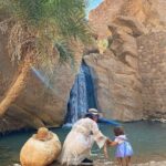 Quand on rêve du Sahara sud tunisien, on imagine des dunes dorées à perte de vue, des couchers de soleil flamboyants, des oasis secrètes, des villages troglodytes… Et on veut y aller facilement, en toute sécurité, avec un chauffeur privé qui connaît chaque piste. C’est précisément ce que nous proposons : des circuits “Uber-like” au sens de simples, directs, personnalisés, où le transfert, le taxi ou la navette privée s’imbriquent parfaitement à votre excursion dans le désert. Avec sudtunisie.com , vous choisissez le confort d’un service porte-à-porte et la liberté d’un voyage taillé sur mesure. Des circuits désert conçus pour vous : flexibles, privés et 100% personnalisables Nous savons que chaque voyageur a son rythme, ses envies et son budget. Nos circuits désert au sud de la Tunisie s’adaptent à vos dates, votre point de départ (Tunis, Hammamet, Sousse, Monastir, Sfax, Djerba, Tozeur…) et vos préférences (bivouac authentique, camp tout confort, hôtels 4★, escapade photo, aventure soft en famille, etc.). Transferts privés depuis l’aéroport, l’hôtel ou chez vous. 4×4 climatisés pilotés par des chauffeurs-guides francophones connaissant les pistes et les petits secrets du désert. Navettes dédiées pour relier les étapes sans stress. Rythme sur mesure : arrêts photo, pauses thé, couchers de soleil, observation des étoiles… c’est vous qui validez. Dès votre prise en charge, on s’occupe de tout : bagages, eau fraîche, briefing clair, sécurité. L’idée est simple : profiter, immortaliser et ressentir le Sahara, sans se soucier de la logistique. Nos incontournables du Sahara sud tunisien – l’ADN de nos “Uber Circuits” Douz, la Porte du désert Douz incarne le Sahara que l’on attend : dunes soyeuses, balade chamelière, bivouac sous les étoiles. On organise des randonnées à dos de dromadaire, des couchers de soleil sur les crêtes de sable et, pour les amateurs, une initiation quad sur terrain dédié (encadrement pro). Ksar Ghilane, l’oasis chaude Au milieu des dunes, une source d’eau chaude naturelle vous attend pour un bain relaxant après la route. On peut y passer une journée détente ou une nuit sous tente dans un camp saharien. Les pistes autour sont superbes et mènent vers des ksours et petits forts abandonnés. Matmata et les maisons troglodytes À Matmata, on visite des habitations creusées dans la roche, on comprend le génie d’adaptation des habitants, on savoure un déjeuner terroir. L’ambiance est unique, et les paysages lunaires, étonnants. Chott el-Jérid, le lac salé miroir Entre Tozeur et Douz, le Chott el-Jérid déroule son immense croûte de sel. Au lever comme au coucher du soleil, les reflets sont magiques ; on s’y arrête pour des photos mémorables. Tozeur, Chebika, Tamerza & Mides Dans les montagnes de l’Atlas tunisien, les oasis de Chebika et Tamerza offrent palmeraies, cascades et canyons. Mides, à la frontière algérienne, dévoile un canyon sculpté à la beauté brute. On alterne pistes de sable, ruelles d’oasis et panoramas grandioses. Ong Jmel & les décors de cinéma Près de Tozeur, Ong Jmel (“le cou du chameau”) et les décors mythiques de tournages invitent à jouer les explorateurs. Pour les passionnés, nous planifions la golden hour au bon endroit. Exemples d’itinéraires “clés en main” — transférés, guidés, validés Pour vous donner une idée, voici quelques exemples. Ils sont modulables selon votre temps et vos envies. Tous incluent le transfert privé (taxi/navette), le chauffeur-guide, les hébergements (tentes/camps/hôtels selon le choix) et les repas indiqués. 2 jours / 1 nuit — Douz & le bivouac Jour 1 : Transfert privé depuis votre ville (Tunis/Hammamet/Sousse/Monastir/Djerba/Tozeur). Arrivée à Douz, balade à dos de dromadaire, installation au camp. Dîner nomade et nuit sous les étoiles. Jour 2 : Lever de soleil sur les dunes, petit-déjeuner, retour en 4×4 par une piste panoramique, passage par le Chott el-Jérid pour photos, déjeuner local. Transfert retour à votre hébergement. 3 jours / 2 nuits — Matmata, Douz & Ksar Ghilane Jour 1 : Départ en navette privée. Matmata (maisons troglodytes), déjeuner traditionnel, arrivée Douz. Coucher de soleil et bivouac. Jour 2 : Cap sur Ksar Ghilane par les pistes. Bain dans la source chaude, temps libre (quad en option), nuit en camp. Jour 3 : Piste retour via ksours, haltes photo, déjeuner au village. Transfert vers votre ville d’origine. 4 jours / 3 nuits — Oasis de montagne & Sahara Jour 1 : Tozeur et médina, palmeraie, musée/écomusée (selon intérêts). Jour 2 : Chebika – Tamerza – Mides, marche facile dans les gorges, cascades, panoramas. Jour 3 : Ong Jmel, désert de Star Wars, piste jusqu’à Douz, balade chamelière, bivouac. Jour 4 : Chott el-Jérid au retour, déjeuner terroir, navette privée jusqu’à l’aéroport ou l’hôtel. 7 à 8 jours — Grand tour du Sud Un grand itinéraire combinant oasis de montagne, villages troglodytes, ksours de Tataouine, mer de dunes, bivouacs et nuits en camp confort. Idéal pour photographes, familles en slow travel ou épices d’aventure. Pour découvrir toutes nos idées et variantes, parcourez nos circuits désert sur cette page dédiée et piochez l’inspiration qui vous ressemble. Transfert, Taxi, Navette privé : le “sans friction” de votre voyage Un bon circuit commence par un transfert fluide. Nous opérons en prise en charge directe là où vous êtes : Aéroports (Tunis-Carthage, Enfidha, Monastir, Djerba-Zarzis, Tozeur). Gares routières, hôtels, locations saisonnières. Horaires flexibles, adaptation sur retards de vols. Véhicules : berlines confortables, vans, 4×4 climatisés, sièges enfants sur demande, bagageries volumineuses pour les grands voyageurs. Chauffeurs-guides : francophones/anglophones, certifiés, rompus aux itinéraires sahariens, formés sécurité & conduite sur piste. Itinéraires intelligents : nos chauffeurs optimisent trafic, pauses, points panoramiques, pour arriver détendus et à l’heure. Assistance : numéro dédié, suivi de votre dossier, plan B en cas d’imprévus (météo, fermetures temporaires, etc.). Hébergements : du bivouac authentique au camp premium Votre nuit dans le désert, c’est le moment fort. À vous de choisir : Bivouac nomade : tentes bédouines, feu de camp, milliers d’étoiles au-dessus, repas traditionnel cuit au sable ou tajine selon les places. Camp confort : tentes équipées (literie, sanitaires partagés ou privés), cuisine locale, générateur le soir, parfois électricité solaire. Hôtels 3★/4★ en oasis et villes étapes : piscine, wifi, confort pour alterner aventure et repos. Nous conseillons selon la saison, la météo, votre budget et vos attentes de confort. Le mix hôtel + camp marche très bien pour garder souplesse et bien-être. Quand partir ? Climat, saisons et conseils d’habillement Octobre à avril : haute période pour le désert. Journées douces, nuits fraîches (prévoir veste, polaire, bonnet pour les plus frileux). Mai & septembre : intermédiaires ; on privilégie départs matinaux et fin de journée. Juin à août : chaleur marquée ; circuits possibles avec rythme adapté, pauses à l’ombre, hydratation renforcée, air conditionné en route. À mettre dans le sac : foulard/bandana, lunettes de soleil, crème SPF, baume à lèvres, chaussures fermées, veste légère nocturne, batterie externe. L’eau est incluse dans nos transferts et la plupart des étapes. Combien ça coûte ? Exemple de budgets & devis personnalisé Les prix varient selon la durée, la catégorie d’hébergements, la saison et le nombre de participants. À titre indicatif : 2 jours/1 nuit (Douz + bivouac), base 2 à 4 pers. : abordable, idéal premier contact. 3 jours/2 nuits (Matmata + Douz + Ksar Ghilane) : excellent rapport diversité/prix. 4 à 5 jours (Oasis de montagne + Sahara) : équilibre parfait entre paysages et immersion. 7 à 8 jours : grand tour pour amateurs d’itinérance. Le plus simple : demandez un devis clair et rapide via notre formulaire dédié ; on vous envoie une proposition détaillée (programme, distances, inclus, non inclus, options quad/chameau/photo, etc.) avec prix final sans surprise. Qualité, sécurité, sérénité : notre promesse Guides & chauffeurs agréés, briefés sécurité, dotés de téléphonie satellite sur les étapes les plus isolées. Entretien régulier des 4×4, pneus adaptés, kit secours et eau à bord. Rythme humain : pauses hydratation, repas sains, gestion des intolérances/alergies sur demande. Familles & enfants bienvenus, sièges auto disponibles. Voyageuses solo : accompagnement et hébergements sécurisés. Assurance RC pro & plan d’urgence coordonné avec notre bureau local. Expériences sur-mesure : photo, gastronomie, bien-être, culture Photo-trip : lever/coucher du soleil, lune sur dunes, voies lactées (selon période), arrêts panoramiques pensés pour votre matériel. Gastro & terroir : méchoui, couscous d’oasis, pain cuit dans le sable, dattes de Tozeur, thé à la menthe. Bien-être : bain à Ksar Ghilane, étirements matinaux dans les dunes, pauses slow travel. Culture & rencontres : musique traditionnelle, artisanat (tressage de feuilles de palmier), légendes du désert. Pourquoi nous faire confiance ? Avis et bouche-à-oreille Nos voyageurs parlent le mieux de nous. Consultez leurs retours et photos ici : 👉 Voir les avis sur TripAdvisor Ces témoignages reflètent notre sens du détail, notre réactivité et la qualité de nos chauffeurs-guides. Nous nous appuyons sur une équipe locale stable, des partenaires sérieux et une logistique éprouvée. FAQ express — Excursion Sahara Sud Tunisien, Transfert Taxi & Navette privé Combien d’heures de route par jour ? Nous visons 3 à 5 heures avec pauses régulières. Les longues liaisons sont réparties intelligemment, surtout en famille. Et si mon vol est retardé ? Nous suivons les vols ; votre chauffeur attend et nous ajustons le départ sans vous stresser. Peut-on faire l’excursion avec de jeunes enfants ? Oui, avec rythme adapté, sièges auto, pauses fréquentes et nuits confort. Les enfants adorent les dromadaires et le ciel étoilé. Quelles options “aventure” proposez-vous ? Quad, balade chamelière, marche douce sur dunes, shooting photo, bivouac… Toujours encadré et assuré. Y a-t-il du wifi ? Dans les villes et hôtels, souvent oui. Dans le désert, on privilégie la déconnexion, mais nous gardons radio/Tel. sat pour la sécurité. Et la nourriture ? Cuisine tunisienne généreuse ; on gère végétarien, intolérances ou sans gluten à la demande avant le départ. Conseils pratiques pour un désert sans faux pas Hydratez-vous souvent, même sans soif. Portez chaussures fermées pour les marches ; sandales à l’oasis. Respect des lieux : pas de déchets, pas de prélèvements (fossiles, plantes). Protégez votre matériel photo du sable (sacs zippés, pare-soleil, pinceau doux). Cash utile dans certains villages ; les cartes passent en ville. Documents : passeport ou CNI (selon nationalité), assurance voyage conseillée. Engagement local & tourisme responsable Choisir nos Uber Circuits sahariens, c’est soutenir : des guides et chauffeurs du cru, des camps et maisons d’hôtes gérés localement, des fournisseurs de produits du terroir, des initiatives de réduction des plastiques et de mise en avant des savoir-faire. Nous limitons l’impact environnemental (optimisation des trajets, tri quand possible, incitation à la réutilisation des gourdes) et accompagnons nos équipes sur les bonnes pratiques. Réservez votre circuit désert en 3 étapes simples Inspirez-vous : feuilletez nos circuits désert sur sudtunisie.com . Demandez votre devis : dites-nous vos dates, point de départ, niveau de confort, activités souhaitées via ce formulaire de contact/devis . Validez & partez : on verrouille les transferts privés, les camps/hôtels, le chauffeur-guide et les options. Vous recevez un récap clair et vous n’avez plus qu’à faire vos valises. Pourquoi notre approche “Uber Circuit” surclasse le reste Simplicité : pas de casse-tête. On vient vous chercher et on vous ramène. Privatisation totale : taxi/navette privé, itinéraire flexible, arrêts à la carte. Expertise locale : pistes maîtrisées, bons plans panoramas & adresses authentiques. Sécurité : matériel, procédures, anticipation météo. Rapport qualité/prix : transparence, zéro frais cachés, programmes pleins mais jamais pressés. Preuves à l’appui : lisez nos avis certifiés et regardez les photos des voyageurs. Appelez le désert par son nom — et laissez-nous conduire Le Sahara sud tunisien n’est pas seulement un décor : c’est un rythme, une lumière, un silence qu’on n’oublie pas. Notre rôle est de vous y emmener facilement, en privé, en sécurité, et de vous créer des instants vrais : une théière qui fume au camp, un vent tiède qui flotte au crépuscule, un ciel si dense qu’on compte les constellations. Prêts pour votre excursion ? On s’occupe du transfert, du taxi, de la navette privée — et vous, vous profitez. ➡️ Inspirez-vous ici : Circuits désert — sudtunisie.com ➡️ Demandez votre devis clair : Contact & Devis ➡️ Lisez les avis récents : Notre TripAdvisor