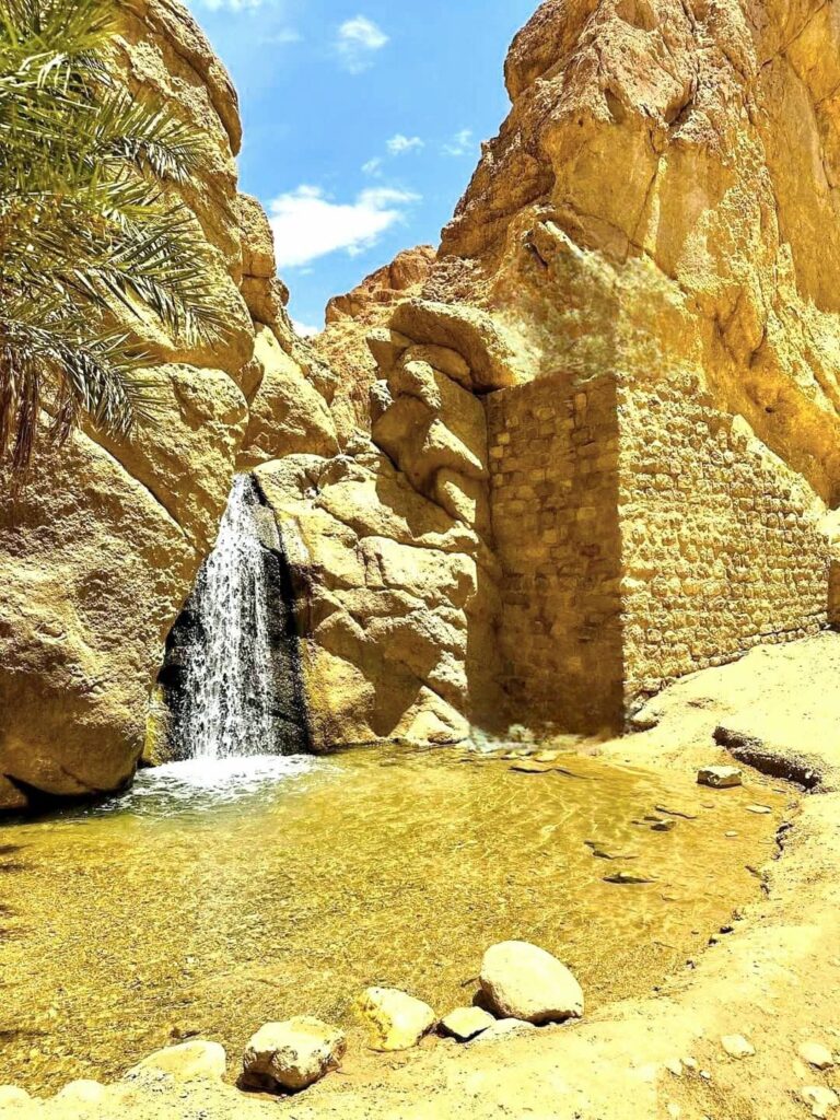 La Tunisie est bien plus qu’une destination de soleil et de plage. Au-delà de ses stations balnéaires mondialement connues, elle cache un véritable trésor : le Sahara tunisien. Un désert aux paysages envoûtants, aux dunes dorées et aux oasis verdoyantes, où chaque voyage devient une aventure hors du temps. Chez sudtunisie.com, nous proposons des circuits personnalisés dans le Sud tunisien, avec transferts privés et excursions adaptées à vos envies, pour une immersion totale au cœur de la culture et de la nature saharienne. Découvrir le Sahara tunisien : une expérience unique Le Sud tunisien fascine par la diversité de ses paysages. Entre les oasis de montagne de Chebika et Tamerza, le lac salé du Chott El Jerid, les villages troglodytes de Matmata et les grandes dunes de Douz, chaque étape offre un spectacle naturel à couper le souffle. Voyager dans le Sahara, ce n’est pas seulement contempler des paysages. C’est aussi rencontrer les habitants, découvrir leurs traditions, partager un thé sous une tente berbère, et ressentir cette hospitalité chaleureuse propre à la culture tunisienne. Avec sudtunisie.com, nous organisons des circuits qui vous emmènent dans les endroits incontournables mais aussi dans des lieux plus secrets, hors des sentiers battus. Notre objectif est simple : vous faire vivre le Sahara comme si vous y étiez invité. Nos circuits et excursions dans le Sud tunisien 1. Circuit découverte des oasis et villages sahariens Un programme idéal pour ceux qui veulent allier culture et nature. Ce circuit comprend : La visite du Chott El Jerid, un lac salé aux reflets roses et argentés. Les villages troglodytes de Matmata, connus pour leurs habitations creusées dans la roche et pour avoir servi de décor à la saga Star Wars. Les oasis de montagne de Chebika et Tamerza, véritables paradis au cœur du désert. La découverte de Tozeur, capitale du Sud, avec son architecture en briques ocre et ses palmeraies à perte de vue. 2. Excursion Douz et nuit sous tente dans le désert Surnommée la "porte du désert", Douz est le point de départ idéal pour une immersion totale dans les dunes du Sahara. Nous vous proposons : Une balade à dos de dromadaire ou en quad au coucher du soleil. Une soirée sous une tente traditionnelle, avec dîner typique autour du feu. Une nuit magique sous un ciel étoilé, loin de toute pollution lumineuse. 3. Circuit culturel et historique Le Sud tunisien est aussi un territoire riche en histoire. Ce circuit inclut : La visite de l’amphithéâtre d’El Jem, classé au patrimoine mondial de l’UNESCO. Les ksour de Tataouine, ces anciens greniers fortifiés où les Berbères stockaient leurs récoltes. Les marchés traditionnels où l’on découvre les épices, l’artisanat et les saveurs locales. 4. Séjours sur mesure et circuits personnalisés Chaque voyageur est unique. C’est pourquoi nous proposons également des circuits personnalisés, selon vos envies : aventure sportive, voyage en famille, séjour romantique, ou expérience authentique chez l’habitant. Vous pouvez découvrir plus de détails sur nos offres en visitant nos circuits désert en Tunisie . Le confort d’un transfert et d’une navette privée Lorsque l’on voyage dans le désert, le confort et la sécurité sont essentiels. Chez sudtunisie.com, nous mettons à disposition des navettes privées climatisées, avec chauffeurs expérimentés qui connaissent parfaitement les routes du Sud. Fini les longs trajets fatigants en bus ou les attentes interminables. Avec nos transferts privés, vous voyagez à votre rythme, vous profitez des paysages, et vous arrivez directement à votre hôtel, campement ou lieu de visite. Ce service est particulièrement apprécié des familles et des couples qui souhaitent voyager en toute tranquillité. Il permet aussi de gagner un temps précieux, pour profiter pleinement de chaque moment dans le désert. Pourquoi choisir sudtunisie.com pour votre circuit Sahara ? Expertise locale : Nous sommes basés dans le Sud tunisien et travaillons avec des guides locaux passionnés. Circuits authentiques : Loin des circuits touristiques classiques, nous privilégions les expériences réelles et les rencontres humaines. Flexibilité totale : Que vous voyagiez seul, en couple, en famille ou en groupe, nous adaptons chaque programme à vos attentes. Sécurité et confort : Des véhicules adaptés, des chauffeurs professionnels et un accompagnement constant. Tarifs transparents : Pas de frais cachés, tout est clair dès le départ. Nous croyons qu’un voyage dans le Sahara doit être une expérience inoubliable, pas seulement une excursion rapide. C’est pourquoi nous proposons des séjours immersifs qui permettent de ressentir l’âme du désert. Des souvenirs impérissables dans le désert tunisien Rares sont les lieux qui marquent autant que le Sahara tunisien. Les voyageurs repartent souvent transformés, avec des souvenirs gravés à jamais : Le silence impressionnant du désert, brisé seulement par le vent et le pas lent d’un dromadaire. Les couleurs changeantes du sable, du doré au rouge flamboyant au coucher du soleil. Les moments de partage avec les habitants, autour d’un repas ou d’une danse traditionnelle. C’est ce mélange d’authenticité, de beauté et d’émotion qui fait du Sud tunisien une destination unique au monde. Réservez votre circuit Sahara en toute simplicité Vous souhaitez vivre cette expérience incroyable ? Rien de plus simple. Sur notre site, vous pouvez demander un devis personnalisé et planifier votre voyage selon vos envies et votre budget. ➡️ Faites votre demande directement ici : Demande de devis pour un voyage dans le désert tunisien . Chaque demande est traitée rapidement par notre équipe, afin de vous proposer la meilleure offre possible. Ils ont voyagé avec nous : avis et témoignages La satisfaction de nos voyageurs est notre meilleure récompense. Beaucoup d’entre eux partagent leurs expériences positives et leurs moments forts vécus avec nous. Vous pouvez consulter leurs avis authentiques ici : Avis Sud Tunisie sur TripAdvisor . Ces retours confirment que voyager avec sudtunisie.com, c’est choisir un séjour de qualité, une organisation professionnelle et des souvenirs inoubliables. Conclusion : le Sahara tunisien, une aventure à vivre absolument Un voyage en Tunisie ne serait pas complet sans une immersion dans le Sud saharien. Que vous rêviez d’une nuit magique sous les étoiles, d’une balade à dos de dromadaire, d’une visite des oasis spectaculaires ou d’une découverte culturelle dans les villages berbères, sudtunisie.com est le partenaire idéal pour faire de ce rêve une réalité. En choisissant nos circuits et excursions Sahara Sud tunisien, vous bénéficiez de tout le confort d’un transfert privé, de l’accompagnement de guides expérimentés, et de l’assurance de vivre une expérience authentique et mémorable. Alors, êtes-vous prêts à embarquer pour une aventure inoubliable au cœur du désert tunisien ?