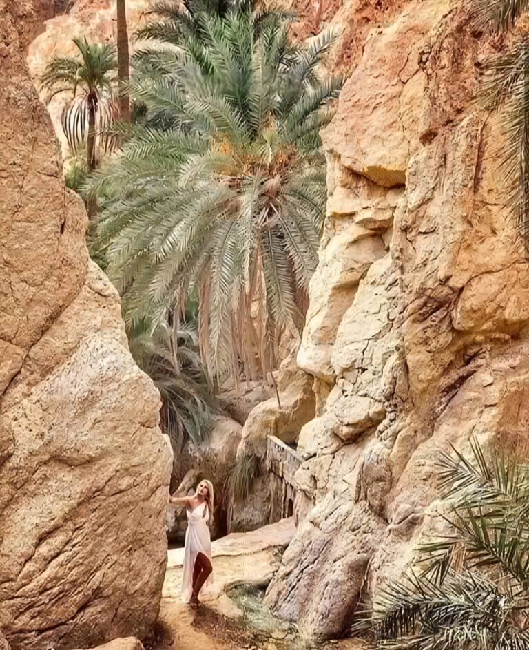 Plongez dans l’immensité du Sahara tunisien, un monde à part, fait de dunes dorées, de palmeraies verdoyantes et de villages authentiques. Chez sudtunisie.com, nous vous emmenons là où le silence parle, où le désert vous envoûte, et où chaque instant devient un souvenir impérissable. Un circuit désert personnalisé avec navette privée Vous rêvez d’un circuit dans le désert du sud tunisien, loin des foules touristiques ? Nous vous proposons des excursions sur mesure, avec transfert privé depuis n’importe quelle ville : Djerba, Tozeur, Douz, Tunis ou même Hammamet. Pas de stress, tout est organisé : transport, hébergement, repas, activités… il vous suffit de vous laisser porter. Pourquoi choisir une navette privée ? Confort total Horaires flexibles Arrêts personnalisés Chauffeur local expérimenté → Découvrez nos offres : Circuits désert sud Tunisie Escapade authentique : Douz, Ksar Ghilane, Matmata et Tozeur Chaque étape de nos circuits est pensée pour vous plonger dans la culture et la beauté sauvage du sud tunisien : Douz : la porte du Sahara. Promenade à dos de dromadaire, rencontre avec les nomades, coucher de soleil sur les dunes. Ksar Ghilane : oasis thermale au milieu du désert. Baignade dans la source chaude et nuit magique sous tente. Matmata : les fameuses maisons troglodytes berbères. Un décor de cinéma, littéralement ! Tozeur et Nefta : palmeraies, oasis de montagne (Chebika, Tamerza), et décor de Star Wars. Nos circuits combinent ces merveilles pour une immersion inoubliable, sur 2, 3, 4 ou 5 jours. Envie d’un programme spécial ? On le crée pour vous. Nuitée sous tente : vivez le désert autrement Rien ne vaut une nuit dans le désert, loin de toute lumière artificielle, sous un ciel étoilé à couper le souffle. Avec sudtunisie.com, vous dormez : Soit dans des camps confort avec douche et repas typiques Soit en bivouac sauvage, au cœur des dunes, pour les plus aventuriers Une veillée autour du feu, du pain cuit dans le sable, des chants traditionnels… C’est tout ça, et plus encore. Activités incontournables pendant votre circuit Nos excursions dans le sud tunisien sont bien plus que de simples visites. Voici un avant-goût de ce que vous pourrez vivre : Randonnée chamelière dans les dunes Balade en quad ou 4x4 dans les étendues sablonneuses Bain thermal à Ksar Ghilane Visite de villages berbères et de ksour historiques (Chenini, Douiret, Ksar Ouled Soltane) Oasis de montagne : trek dans les gorges de Tamerza et Chebika Décor de Star Wars : le village de Mos Espa dans le désert de Ong Jemel Nuit dans un hôtel de charme à Tozeur, Nefta ou Tataouine Et bien sûr, gastronomie locale avec couscous, méchoui, chakchouka et dattes fraîches du coin. Des circuits adaptés à tous les profils Que vous soyez en couple, en famille avec enfants, en groupe d’amis ou en solo, nous avons des circuits adaptés : Excursions de 1 journée : parfait pour les voyageurs pressés Séjours de 2 à 5 jours : immersion totale avec plusieurs étapes Formules luxe ou économiques : selon votre budget Circuits aventure ou détente : selon votre style Nous proposons également des circuits à thème : trekking, photographie, méditation dans le désert, anniversaires dans les dunes… Demandez votre devis gratuit ici : Contact & réservation Pourquoi voyager avec sudtunisie.com ? 🌍 Expertise locale : nous connaissons chaque piste, chaque oasis, chaque coin secret du Sahara. 🛻 Transport sécurisé et privé : 4x4 climatisés, chauffeurs professionnels, ponctualité garantie. 🏕️ Hébergements testés et approuvés : hôtels, camps et maisons d’hôtes partenaires. 🎯 Flexibilité totale : vous choisissez le rythme, le point de départ, les dates, les activités. 💬 Accompagnement personnalisé : notre équipe reste joignable avant, pendant et après votre séjour. ✅ Et surtout : des avis clients excellents. Lisez-les ici : Voir les témoignages TripAdvisor Un itinéraire type de 3 jours dans le Sahara Voici un exemple de programme pour vous donner une idée concrète : Jour 1 : Djerba – Matmata – Douz Départ le matin avec notre chauffeur Pause café dans un village berbère Visite de Matmata et déjeuner chez l’habitant Traversée du Chott El Jerid (lac salé) Arrivée à Douz, balade à dos de dromadaire Dîner et nuit sous tente dans le désert Jour 2 : Douz – Ksar Ghilane – Tataouine Réveil au lever du soleil Route vers Ksar Ghilane, bain thermal Déjeuner dans l’oasis Visite du ksar Ouled Soltane et village de Chenini Nuit à Tataouine en maison d’hôte Jour 3 : Tataouine – Tamerza – Tozeur Départ vers les oasis de montagne Randonnée à Chebika et Tamerza Déjeuner avec vue panoramique Arrivée à Tozeur, visite de la vieille ville et des décorations Star Wars Fin du circuit ou extension possible Tarifs attractifs et transparents Nos prix sont étudiés pour offrir le meilleur rapport qualité/prix : À partir de 120 € / personne / jour (tout compris) Réduction pour enfants ou groupes Options personnalisables selon vos envies et budget Tous nos circuits incluent : Transfert privé aller-retour Guide local francophone Hébergement (tente, hôtel, etc.) Repas complets Activités prévues dans le programme Aucun coût caché. Vous recevez un devis clair, détaillé et sans engagement. Comment réserver votre circuit Sahara ? Choisissez votre destination ou laissez-nous vous conseiller Remplissez le formulaire ici : Demander un devis personnalisé Recevez votre programme sous 24h Confirmez et préparez votre sac à dos, on s’occupe du reste Et pour voir les avis de ceux qui nous ont déjà fait confiance : Consultez nos retours clients Conclusion Le sud tunisien est une terre magique, puissante et apaisante. Avec sudtunisie.com, vous vivez cette aventure de manière fluide, confortable, et surtout, authentique. Que ce soit pour un week-end ou une semaine, en amoureux ou entre amis, le désert vous attend. Et nous, on est là pour vous y emmener dans les meilleures conditions.