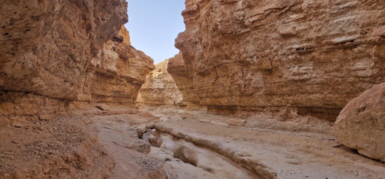 Découvrir le sud tunisien en circuit, c’est entrer dans un univers où la lumière, le silence et l’hospitalité bédouine façonnent une aventure à taille humaine. Nous concevons des circuits désert et des randonnées dans le Sahara qui marient sites emblématiques, moments de partage et confort maîtrisé, tout en préservant la magie de l’itinérance. Des oasis de Tozeur aux dunes de Douz, de Ksar Ghilane aux ksour de Tataouine, en passant par les villages troglodytes de Matmata, nos itinéraires sont pensés pour que chaque heure sur la piste raconte une histoire… la vôtre. Pour un aperçu de nos itinéraires et disponibilités, explorez nos circuits désert en Tunisie. Un circuit désert pensé pour vous : immersion, confort et liberté Nous défendons une vision simple : un voyage dans le désert doit être à la fois authentique, sécurisé et flexible. Cela se traduit par : Des étapes équilibrées : temps de route raisonnables, pauses photo, haltes thé à la menthe, couchers de soleil aux bons spots. Des hébergements sélectionnés : maisons d’hôtes de charme, campements sahariens conforts, tentes privatives avec literie et sanitaires adaptés à l’étape. Une équipe locale : chauffeurs 4×4, chameliers, cuisiniers de bivouac, guides francophones connaissant la piste comme leur poche. Un rythme sur mesure : en famille, entre amis ou en couple, nous adaptons la difficulté des randonnées, la durée des méharées et la part d’aventure. Notre différence se voit surtout sur le terrain : choix des pistes (éviter les foules), timing des levers/parties de dunes, rencontres authentiques, et petits détails qui transforment une belle journée en souvenir impérissable. Itinéraires-signatures : du week-end saharien au grand tour Douz & Ksar Ghilane Express — 2 jours/1 nuit Jour 1 : Accueil (Tozeur, Djerba ou Gabès), route vers Douz, halte au souk, méharée pour un premier contact avec la dune, dîner au feu de camp, nuit sous tente berbère. Jour 2 : Piste pour Ksar Ghilane, baignade dans la source d’eau chaude, possibilité d’un quad ou d’un 4×4 jusqu’au fort romain, déjeuner sous la khaïma, retour par les pistes de sables. Idéal pour une première immersion. Grand Erg & Oasis de Montagne — 3 jours/2 nuits Jour 1 : Tozeur (médina ocre), Chebika et Tamerza (cascades, palmeraies suspendues), coucher de soleil à Ong Jemel. Jour 2 : Traversée de chotts, Douz et initiation au sandboard, dîner sous les étoiles. Jour 3 : Ksar Ghilane, source thermale, piste vers Matmata, visite des maisons troglodytes, retour via Gabès. Un condensé paysages + culture. Sables, Ksour & Troglodytes — 5 jours/4 nuits Jour 1 : Oasis de Nefta et corbeille, coucher de soleil. Jour 2 : Grandes dunes du Grand Erg Oriental, bivouac au cœur du silence. Jour 3 : Tataouine et ksour (Chenini, Ksar Ouled Soltane), déjeuner chez l’habitant. Jour 4 : Ksar Ghilane, méharée ou balade à pied sur la crête des dunes, dîner méchoui. Jour 5 : Matmata, café dans un patio troglodyte, route retour. Le must pour une variété de décors. Trek Sahara & Bivouacs — 7 à 8 jours Une randonnée saharienne plus engagée : marche matinale (3–5 h), pause à l’ombre, cueillette d’histoires autour du feu, bivouac itinérant sous les étoiles. Convient aux voyageurs en quête de déconnexion profonde. Logistique complète : eau, intendance, sécurité, balisage traditionnel par les guides locaux. Randonnée dans le Sahara : marcher au rythme des dunes Randonner dans le Sahara n’est pas un exploit sportif, c’est une rencontre : avec la lumière, la ligne d’horizon, la musique du vent. Nous structurons nos treks autour de : Étapes matinales : profiter de la fraîcheur, réduire l’effort et maximiser le plaisir. Haltes nomades : déjeuner à l’ombre d’un tamaris, initiation au pain de sable, atelier thé. Bivouacs minimalistes mais doux : tapis, couvertures, tentes légères si besoin, et un ciel constellé comme plafond. Pour ceux qui préfèrent alterner, nous combinons méharée (à dos de dromadaire) et marche, afin de soulager les jambes tout en avançant dans le Grand Erg. Les enfants adorent la méharée ; les parents apprécient le rythme paisible et la sécurité. Expériences fortes : du lever de soleil au feu de camp Levers & couchers de soleil : monter sur la crête d’une dune, attendre que l’orangé embrase l’horizon, savourer le calme absolu. Gastronomie saharienne : pain cuit sous le sable, couscous aux légumes locaux, dattes de palmeraies, méchoui lentement confit, thé à la menthe infusé longuement. Nuits étoilées : repérer la Voie lactée, écouter les contes bédouins, reconnaître les constellations. Rencontres : moments simples mais vrais — un proverbe partagé, un geste d’artisan, un rire d’enfant. Ces instants suspendus font la signature d’un voyage réussi : un souvenir sensoriel qui reste. Hébergements : du troglodyte à la tente berbère Nous alternons campements sahariens (tentes privées, literie, douches chaudes selon site), maisons d’hôtes (architecture oasienne), gîtes troglodytes (fraîcheur naturelle). À Ksar Ghilane, la source chaude est un bonheur après la piste ; à Matmata, dormir en chambre troglodyte est une expérience en soi. Les hébergements sont choisis pour leur caractère, leur propreté et leur accueil. Meilleure période pour le désert tunisien Octobre → avril : ciel limpide, températures douces, parfait pour randonnée et bivouac. Mai & septembre : faisables avec départs matinaux, randonnées plus courtes, pauses à l’ombre. Été : chaleur importante ; nous privilégions des circuits confort avec activités très matinales et siestes prolongées. Nous ajustons horaires et intensité au jour le jour en fonction de la météo, de votre forme et de la dynamique du groupe. Logistique & sécurité : l’art de la piste Transport : 4×4 récents, chauffeurs expérimentés, pneus sable, compresseurs, radios. Guidage : guides francophones issus du désert, connaissance fine des pistes et des vents. Intendance : eau potable, repas équilibrés, gestion des régimes (végétarien, halal, intolérances). Sécurité : brief quotidien, trousse de premiers secours, itinéraires validés et plan B si besoin. Voyager bien, c’est voyager sereinement. Nos équipes veillent à ce que vous ne pensiez qu’à profiter. Pour qui ? Familles, couples, tribus d’amis, voyageurs solo Familles : méharées ludiques, dunes “douces”, campements avec sanitaires, ateliers pain & dattes. Couples : bivouac privatif, dîner aux lanternes, thé au sommet d’une dune au coucher du soleil. Amis : quad, sandboard, longues veillées, itinéraires “hors des sentiers battus”. Voyageurs solo : intégration fluide dans de petits groupes, esprit “caravane”. Nous adaptons la cadence, la difficulté et les petits plus (photographie, yoga du matin, astronomie) en fonction de votre style. Conseils pratiques : s’équiper léger, vivre intensément Vêtements : coupe-vent léger, polaire pour la nuit, foulard/cheich, pantalon ample, t-shirt respirant. Chaussures : baskets ou rando légère (tiges souples pour la dune). Soleil : lunettes UV, crème SPF, baume lèvres, casquette ou chapeau. Sac à dos : 20–30 L pour la journée (eau, coupe-vent, appareil photo, petite pharmacie). Énergie & eau : hydratation régulière, dattes/amandes, thermos pour la nuit fraîche. Tech : batterie externe, housse anti-sable, sachets zip pour protéger. Respect : on laisse zéro trace, on suit la piste, on salue, on échange. Personnalisation & devis : votre désert, vos priorités Chaque voyage est unique. Nous calibrons la durée, le niveau de marche, le type d’hébergement, la place des rencontres et des expériences fortes selon vos envies : photo, bien-être, gastronomie, observation des étoiles, patrimoine berbère. Prêt à dessiner votre itinéraire ? Demandez votre devis personnalisé — réponse claire, rapide, sans engagement. Et pour comparer les options et vous inspirer, parcourez nos circuits désert en Tunisie. Engagement local & tourisme responsable Le désert est fragile. Nous limitons la taille des groupes, choisissons des pistes peu fréquentées, rétribuons justement nos équipes locales, et privilégions les tables et hébergements tenus par des familles. Nos bivouacs sont sans plastique à usage unique autant que possible, et nous sensibilisons chacun aux bons gestes : ramassage des déchets, respect des points d’eau, sobriété énergétique. FAQ – Circuit désert & randonnée en Tunisie Combien de jours pour “sentir” le Sahara ? Dès 2 jours/1 nuit, on goûte au silence des dunes et à la magie du feu de camp. En 3 à 5 jours, on embrasse la diversité : oasis, chotts, ksour, dunes. Au-delà, place à la déconnexion profonde. Faut-il être sportif pour une randonnée saharienne ? Non. Nous ajustons distances et dénivelés (faibles sur la dune). Les étapes se font le matin, avec une grande pause fraîcheur à midi. Méharée possible pour alterner marche/repos. Et les enfants ? Oui, à partir de 5–6 ans selon tempérament. Nous raccourcissons les étapes, ajoutons jeux de sable, chasse aux empreintes, sandboard doux, contes au bivouac. Qu’emporter absolument ? Protection solaire, foulard, gourde réutilisable, coupe-vent, chaussures confortables, curiosité. Le reste, on s’en charge. Peut-on dormir “à la belle étoile” ? Oui, sur demande : matelas + couvertures, avec une tente prête “au cas où”. Une expérience forte, très appréciée par temps calme. Y a-t-il du réseau dans le désert ? Aléatoire. Comptez sur l’instant présent ; signaux ponctuels aux abords de certaines oasis. Quid des repas si je suis végétarien/intolérant ? Nos cuisiniers s’adaptent : légumes grillés, salades, céréales, tajines végétariens. Informez-nous en amont. Comment réserver ? Vous pouvez nous écrire, nous appeler, ou passer par le formulaire dédié : demande de devis désert. Nous revenons vers vous avec un projet sur mesure. Est-ce que les avis clients sont disponibles ? Oui, lisez et laissez votre témoignage sur notre page TripAdvisor. Votre retour compte — il éclaire les prochains voyageurs. Exemple d’une journée idéale dans les dunes Matin – lever de soleil : départ avant l’aube, 20 minutes de marche sur sable frais, thé sucré partagé au sommet d’une dune. Tôt le jour – progression : 2 à 3 heures de marche ondulante, orientation au vent et aux crêtes, repérage des traces de fennec ou de scarabée. Midi – halte ombragée : tamaris, nappe, pain de sable, salade de pois chiches au cumin, sieste légère. Après-midi – douceur : atelier cheich, mini sandboard, lecture, carnet de voyage. Soir – feu & histoires : cuisson lente, thé deux fois tiré, voûte céleste et contes. Cette simplicité raffinée fait tout le sel du Sahara. Nos “plus” qui changent tout sur la piste Taille de groupe maîtrisée : qualité d’écoute, souplesse des arrêts, photos sans foule. Horaires futés : on anticipe les spots, on devance les groupes. Petites attentions : oreillers de bivouac, bougies coupe-vent, cartes des constellations. Pistes alternatives : un désert de nuances, pas un défilé. Partenariats locaux durables : circuit qui profite aux communautés du sud. Passeport pour l’émotion : prêts à tracer votre propre caravane ? Le Sahara tunisien n’est pas un décor, c’est un rythme. Un art discret de ralentir, d’ouvrir les sens, d’additionner des moments vrais. Que vous aimiez randonner au long cours, alterner méharée et bivouac, multiplier les oasis et ksour, ou simplement toucher du doigt la grandeur des dunes le temps d’un week-end, nous bâtissons le voyage qui vous ressemble. Commencez par vous inspirer ici : circuits désert en Tunisie. Puis confiez-nous vos attentes, vos dates, vos envies d’aventure douce : demande de devis. Enfin, à votre retour, aidez d’autres voyageurs à rêver juste : laissez votre avis sur TripAdvisor. Le désert vous attend — et nous serons là, pas à pas, pour en faire votre plus belle parenthèse.