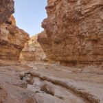 Un circuit dans le sud tunisien est bien plus qu’un voyage, c’est une véritable immersion dans l’âme du pays. Entre randonnées dans le Sahara, découverte des traditions berbères et nuits étoilées au cœur du désert, chaque instant devient un souvenir gravé. Avec sudtunisie.com, nous avons conçu des itinéraires uniques qui allient aventure, authenticité et confort, afin que chaque voyageur puisse vivre une expérience exceptionnelle. Découvrir le sud tunisien : une aventure entre oasis, dunes et villages berbères Le sud tunisien est une terre de contrastes, où les paysages changent à chaque étape du voyage. Loin des côtes animées et des stations balnéaires, cette région offre un visage authentique et profondément attachant. Tozeur et Nefta : portes d’entrée du Sahara, elles séduisent avec leurs immenses palmeraies et leur architecture traditionnelle en briques ocre. Douz : surnommée la "porte du désert", elle marque le point de départ idéal pour une excursion à dos de dromadaire ou en 4x4. Matmata : ses habitations troglodytiques témoignent de l’ingéniosité berbère face au climat désertique. Tataouine et ses ksour : véritables châteaux de sable, ces anciens greniers fortifiés racontent une histoire millénaire. Ksar Ghilane : oasis mythique où l’eau chaude jaillit au milieu des dunes, offrant un contraste saisissant. Chaque village, chaque site, chaque oasis dévoile une facette unique de la culture et des traditions du sud tunisien. Randonnées et excursions dans le Sahara tunisien À dos de dromadaire, comme un nomade Rien n’égale la sensation de marcher au rythme lent du dromadaire, animal emblématique du Sahara. Une méharée vous plonge dans une atmosphère intemporelle, où l’on redécouvre la simplicité du voyage et la beauté du silence du désert. Balades en 4x4 sur les pistes sahariennes Pour ceux qui préfèrent l’adrénaline, les circuits en 4x4 sont idéaux. Les pistes serpentent entre dunes, montagnes et plateaux, dévoilant des panoramas grandioses. Ces excursions permettent d’accéder à des sites isolés, là où la nature reste intacte et préservée. Nuits sahariennes sous les étoiles Dormir dans le désert est une expérience inoubliable. Les campements traditionnels offrent un confort simple mais chaleureux. Autour du feu, on déguste des plats typiques comme le couscous ou l’agneau méchoui, accompagnés de chants et de danses berbères. Et quand la nuit tombe, le ciel étoilé dévoile une infinité de constellations, rarement visibles ailleurs. Randonnées pédestres et trekking Pour les voyageurs avides de nature et de marche, des circuits de trekking permettent d’explorer le désert à pied. C’est l’occasion idéale de s’imprégner du paysage, d’observer la flore et de rencontrer les habitants nomades qui perpétuent un mode de vie ancestral. Découvrez nos programmes complets ici : circuits désert en Tunisie. Culture et traditions : une immersion authentique Le sud tunisien n’est pas seulement un décor naturel impressionnant, c’est aussi une terre riche en culture et en traditions. Hospitalité berbère : chaque rencontre est l’occasion de partager un thé à la menthe ou un repas convivial. Artisanat local : poteries, tapis et bijoux témoignent du savoir-faire ancestral transmis de génération en génération. Festivals sahariens : à Douz, le Festival International du Sahara célèbre chaque année les traditions nomades à travers spectacles, courses de dromadaires et musiques traditionnelles. Visiter le sud tunisien, c’est donc plonger dans un univers où l’homme et la nature vivent en harmonie depuis des siècles. Les moments forts d’un circuit saharien avec sudtunisie.com Admirer un coucher de soleil sur les dunes de Douz. Se baigner dans la source chaude de Ksar Ghilane après une longue journée d’excursion. Explorer les décors de cinéma de Star Wars à Ong Jmel, près de Nefta. Traverser les chotts, immenses lacs salés scintillant sous le soleil. Découvrir les maisons troglodytiques de Matmata, encore habitées aujourd’hui. Partager un dîner sous tente et écouter les histoires des guides berbères. Chaque circuit est pensé pour offrir un mélange parfait entre aventure, détente et découvertes culturelles. Quand partir en excursion Sahara en Tunisie ? La meilleure période pour profiter d’un circuit désert en Tunisie s’étend d’octobre à avril. Les températures sont alors agréables, permettant d’apprécier les randonnées et les nuits sous tente. L’été, la chaleur est intense mais certaines excursions courtes sont encore possibles tôt le matin ou en soirée. Chaque saison a son charme : Hiver : nuits fraîches et ciel d’une clarté exceptionnelle. Printemps : floraison des oasis et climat doux. Automne : paysages dorés et températures idéales. Pourquoi choisir sudtunisie.com pour votre voyage désert ? Nous organisons des circuits sur mesure, adaptés aux envies et au rythme de chaque voyageur. Nos guides locaux sont passionnés par leur région et partagent avec enthousiasme leur savoir et leur hospitalité. Avec sudtunisie.com, vous bénéficiez de : Une organisation professionnelle et fiable. Des itinéraires authentiques loin du tourisme de masse. Des activités variées (méharées, 4x4, randonnées, dîners traditionnels). Un service personnalisé et flexible selon vos attentes. Vous pouvez obtenir un devis gratuit et détaillé via ce lien : demande de devis voyage désert Tunisie. Avis et expériences des voyageurs Les voyageurs qui ont choisi nos circuits soulignent régulièrement la qualité de l’organisation, l’authenticité des moments partagés et la beauté des paysages traversés. Beaucoup évoquent la magie d’une nuit à Ksar Ghilane, le silence saisissant des dunes ou la convivialité des repas pris en groupe. Vous pouvez lire et partager vos expériences ici : Tripadvisor – Sud Tunisie. Conclusion : une aventure inoubliable au cœur du désert tunisien Un circuit et randonnée en Tunisie avec excursion Sahara est bien plus qu’un voyage : c’est une rencontre avec une culture, une nature grandiose et une hospitalité sincère. Le sud tunisien est un joyau qui mérite d’être découvert, et avec sudtunisie.com, chaque détail est pensé pour rendre votre expérience unique. Que vous rêviez d’explorer les dunes à dos de dromadaire, de dormir sous un ciel étoilé ou de découvrir des villages troglodytiques, nous vous invitons à vivre une aventure inoubliable, entre tradition et modernité, nature et culture.