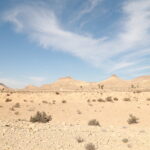 Circuit et Excursion Sud Tunisie — 2 jours & 1 nuit sous tente dans le désert à 390€ pour deux en demi-pension Envie d’un grand bol d’aventure sans renoncer au confort et à la sécurité ? Nous proposons un circuit Sud Tunisie de 2 jours/1 nuit à 390 € pour deux personnes en demi-pension, idéal pour goûter à l’essentiel du Sahara : dunes dorées, oasis vivantes, villages berbères, ciel étoilé… le tout accompagné par notre équipe locale, aux petits soins du début à la fin. Pour découvrir nos autres idées d’itinéraires, jetez un œil à nos circuits désert en Tunisie . Itinéraire détaillé — 2 jours pour toucher du doigt l’infini Jour 1 : Matmata troglodyte → Douz, la porte du Sahara → Nuit sous tente Prise en charge tôt le matin à l’adresse de votre choix : Aéroport Tunis-Carthage, La Marsa, Sidi Bou Saïd, Hammamet, Sousse, Korba, Monastir, Djerba, Cité Ennasr, Le Menzah, Zaghouan, Béja… Grâce à notre navette aéroport/ville , pas de stress logistique : nous venons vous chercher là où vous êtes. Matmata : découverte des maisons troglodytes creusées dans la roche. Accueil chez l’habitant, pause thé à la menthe, immersion dans l’ingéniosité berbère. Déjeuner local en cours de route (plats typiques : couscous, tajine, brick à l’œuf). Douz, « la porte du désert » : vous enfilez un chèche, on ajuste les sangles… et c’est parti pour la balade à dos de dromadaire au coucher du soleil. Calme absolu, dunes à perte de vue, lumière dorée : le Sahara dévoile son âme. Campement berbère : installation en tente confortable (literie, couvertures, sanitaires à proximité). Dîner traditionnel au feu de camp, musique, contes du désert, puis observation des étoiles dans l’un des ciels les plus purs au monde. Option sur demande : quad/buggy sur les cordons de dunes (encadrés par des professionnels), dîner privé dans les dunes, tente premium. Jour 2 : Lever de soleil → Chott El-Jérid → Vieilles briques de Tozeur Réveil aux premières lueurs : café chaud, pain cuit sur les braises, confitures maison. Ceux qui le souhaitent peuvent grimper une dune pour assister au lever de soleil. Chott El-Jérid : traversée du plus grand lac salé d’Afrique du Nord. Mirettes grandes ouvertes sur ses miroirs de sel, ses reflets rose-orangé, et ses mirages qui dansent à l’horizon. Tozeur : flânerie dans la médina aux briques ocre, découverte de la palmeraie (Deglet Nour, systèmes d’irrigation ancestraux), rencontre avec des artisans. Déjeuner de spécialités tozeuroises. Retour en milieu/fin d’après-midi vers votre adresse de départ (ou continuation vers une randonnée montagne Sahara pour prolonger le plaisir). Pour plus d’idées à la journée ou demi-journée ailleurs en Tunisie, inspirerez-vous de notre page Excursion en Tunisie et de notre blog d’excursions en Tunisie , régulièrement mis à jour. Ce qui est inclus — Beaucoup de “waouh”, zéro prise de tête Prix : 390 € pour 2 personnes en demi-pension (dîner + petit-déjeuner au camp). Transferts : aller/retour porte-à-porte via notre service de navette depuis Tunis-Carthage, La Marsa, Sidi Bou Saïd, Hammamet, Sousse, Korba, Monastir, Djerba, Cité Ennasr, Le Menzah, Zaghouan, Béja (et autres lieux sur demande). Guides locaux francophones : passionnés, pédagogues, pros de la sécurité désert. Balade chamelière : équipement fourni (chèche, assistance à la monte). Nuit sous tente : campement authentique confortable, dîner au feu de camp + petit-déjeuner. Assistance 24/7 pendant le voyage. Non inclus : déjeuners, activités optionnelles (quad, buggy, 4×4 privé extra), boissons hors repas, pourboires, dépenses personnelles. Pour une estimation précise selon vos envies (privatisation, anniversaires, lune de miel, famille nombreuse), obtenez un devis gratuit et rapide . Pourquoi nous choisir — Authenticité, sécurité, flexibilité Expérience locale : notre équipe vit ici, connaît les pistes, les saisons, les bons horaires (et les spots photo secrets). Rythme humain : programme dense mais sans course, avec des temps pour profiter, respirer, contempler. Flexibilité totale : ajoutez un bivouac privé, une randonnée en montagne saharienne , ou prolongez vers Chebika, Tamerza, Midès. Tarif clair et doux : à 390 € pour 2, c’est l’un des meilleurs rapports expérience/prix. Recommandations : lisez nos retours voyageurs sur Tripadvisor – Sud Tunisie . Envie de comparer d’autres formats (3 jours/2 nuits, familles, groupes, incentives) ? Parcourez nos circuits désert pour choisir ce qui vous correspond. Départs partout en Tunisie — On vient vous chercher, tout simplement Nous organisons des ramassages et déposes sur une large zone : Aéroport Tunis-Carthage, La Marsa, Sidi Bou Saïd, Hammamet, Sousse, Korba, Monastir, Djerba, Cité Ennasr, Le Menzah, Zaghouan, Béja… Vous n’êtes pas sur la liste ? Pas de souci : on s’adapte. Réservez votre créneau navette ici : Service navette aéroport/ville . Bon à savoir : pour 2 jours/1 nuit, le départ matinal aide à maximiser le temps dans le désert. Nous proposons aussi des départs très tôt (vols du matin) et des retours flexibles. Moments forts — Ce que vous allez vraiment vivre Matmata : les maisons troglodytes (fraîcheur naturelle, patios circulaires) et le récit d’un savoir-faire millénaire. Douz : l’émotion de poser le pied dans les dunes, de monter un dromadaire et de laisser le vent faire danser votre chèche. Camp saharien : nuit sous tente, dîner berbère, tambourin au coin du feu, voie lactée au-dessus de vous. Chott El-Jérid : miroirs de sel, couleurs irréelles, mirages qui jouent avec l’horizon. Tozeur : médina en briques ocre, palmeraie et saveurs du Sud (dattes Deglet Nour, pains de semoule, herbes du désert). Envie d’aller plus loin après ces 2 jours ? Cap sur nos idées de randonnées dans les montagnes du Sahara pour lier dunes et canions oasiens. Conseils pratiques — Voyager léger, respirer grand Quoi emporter Chaussures fermées pour le sable chaud, sandales confort pour le camp. Coupe-vent/polaire (les nuits peuvent être fraîches), chapeau/chèche, lunettes uv, crème solaire. Petite gourde, lingettes, chargeur/powerbank, appareil photo (ou smartphone plein de mémoire !). Climat & saisons Automne/printemps : températures idéales, lumières sublimes. Hiver : journées douces, nuits fraîches (ambiance parfaite pour le feu de camp !). Été : départs très matinaux ou en fin de journée pour éviter les pics. Santé & sécurité Guides certifiés, véhicules contrôlés, eau et trousse de premiers secours à bord. Tentes aérées, literies propres, cuisine soignée. Signal réseau variable : profitez de la déconnexion (et on reste joignables par radio/satellite si besoin). Personnalisation — Votre désert, votre histoire Chaque voyageur a sa version du Sahara. Nous la créons avec vous : Romantique : dîner privé dans les dunes, tente premium, coucher de soleil rien que pour vous. Famille : rythme doux, chameliers patients, mini-atelier « montage de tente » pour les enfants. Entre amis : quad/buggy, veillée musicale, lever du soleil au sommet d’une grande dune. Photo/vidéo : timing “golden hour”, spots panoramiques, assistance cadrage/poses. Rando : ajoutez une journée montagne (Chebika/Tamerza/Midès) ou un trek doux sur les ergs. Parlez-nous de vos envies et on vous prépare un programme sur-mesure : demande de devis . Vous pouvez aussi explorer les thématiques et retours d’expérience sur notre blog excursions Tunisie . FAQ express — Les réponses qu’on nous pose tout le temps Le circuit est-il accessible à tous ? Oui, ce 2 jours/1 nuit convient aux débutants, aux familles et aux voyageurs curieux. Les activités sont adaptables (rythme doux, pauses, alternatives à la marche). Y a-t-il de l’électricité au camp ? Oui, pour recharger téléphones/appareils à certaines heures. Prévoir une powerbank si vous shootez beaucoup. Et pour l’eau/douche ? Eau potable fournie. Les camps disposent de sanitaires propres ; douche selon camp (eau chauffée au soleil). Quid des repas ? Cuisine locale et généreuse (tajines, couscous, salades, fruits). Régimes végétarien/halal/sans gluten : prévenez-nous à la réservation, on s’adapte. On peut partir d’une autre ville ? Bien sûr. Nous couvrons Tunis-Carthage, La Marsa, Sidi Bou Saïd, Hammamet, Sousse, Korba, Monastir, Djerba, Cité Ennasr, Le Menzah, Zaghouan, Béja, et plus encore via notre navette . Peut-on combiner désert et montagne ? Oui ! C’est même magnifique. Inspirez-vous ici : Randonnée montagne Sahara . Comment réserver — Simple, rapide, confirmé Choisissez vos dates et votre ville de départ. Consultez nos circuits désert pour valider le format (2 jours/1 nuit, extensions, privatisation). Demandez un devis gratuit en 1 min (ou via le formulaire contact ). Recevez notre confirmation avec tous les détails pratiques (prise en charge, horaire, contact guide). Préparez votre foulard : le désert vous attend ! Vous aimez lire des retours “vécus” avant de cliquer ? Parcourez nos avis Tripadvisor . Envies d’autres idées près du Sahara — Le meilleur du Sud en quelques clics Inspirations à la journée/à thème : Excursion en Tunisie Récits & bons plans : Blog excursions Tunisie Grandes traversées & variantes : Circuits désert Sommets & canyons : Randonnée montagne Sahara Transferts partout en Tunisie : Navette aéroport Résumé en un clin d’œil — L’essentiel de votre 2j/1n à 390 € Pour qui ? Couples/amis/familles voulant un vrai désert en peu de temps. Où ? Matmata → Douz → Campement → Chott El-Jérid → Tozeur. Quand ? Toute l’année (préférence printemps/automne, très beau hiver). Points forts : balade chamelière, nuit sous tente, feu de camp, lever de soleil, miroirs de sel. Départs : Tunis-Carthage, La Marsa, Sidi Bou Saïd, Hammamet, Sousse, Korba, Monastir, Djerba, Cité Ennasr, Le Menzah, Zaghouan, Béja, etc. Budget : 390 € / 2 pers. en demi-pension. Prochain pas : Demander un devis gratuit et voir nos circuits . On part quand ? Le Sahara n’attend que vous. En 2 jours, vous vivrez à la fois l’immensité des dunes, la douceur des oasis, l’hospitalité berbère et la magie d’un ciel constellé. Laissez-vous porter : on s’occupe de tout (transferts, rythme, repas, sécurité), vous n’avez plus qu’à profiter. Explorer nos idées : Circuits désert Tunisie Réserver sereinement : Devis gratuit immédiat Lire des avis récents : Tripadvisor – Sud Tunisie Prévoir l’arrivée/retour : Navette aéroport/ville Poursuivre l’aventure : Randonnée montagne Sahara – Excursion en Tunisie – Blog excursions À très vite au cœur des dunes !