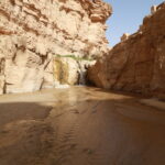 Partir en circuit ou excursion dans le Sud tunisien, c’est plonger au cœur d’un univers où le désert rencontre les oasis, où les traditions se mêlent aux paysages spectaculaires et où chaque instant devient une aventure. Chez Sud Tunisie, nous vous invitons à vivre une expérience unique, entre dunes dorées, villages troglodytes et palmeraies verdoyantes, à travers nos circuits soigneusement pensés pour tous les voyageurs en quête d’authenticité. 1. Le Sud tunisien, une terre d’émotions et de contrastes Le Sud de la Tunisie fascine par sa beauté brute. Des villages berbères de montagne aux étendues infinies du Sahara, tout y respire la liberté et la découverte. Que vous soyez amateur de nature, passionné d’histoire ou simplement curieux de vivre une aventure hors du temps, vous serez émerveillé par la diversité des paysages et des cultures que recèle cette région. Imaginez-vous au lever du soleil, dans les dunes de Douz ou de Ksar Ghilane, le sable encore frais sous vos pieds et le silence absolu du désert qui vous enveloppe. Quelques heures plus tard, vous traversez les oasis de Tozeur, Chebika ou Tamerza, véritables jardins suspendus entre roches et palmiers. Le soir venu, vous contemplez un ciel constellé d’étoiles, autour d’un feu de camp, partageant un dîner typiquement tunisien. Pour mieux découvrir ces lieux emblématiques, explorez nos circuits désert Tunisie : ils vous feront parcourir les sites incontournables tout en profitant d’un confort optimal et d’un accompagnement personnalisé. 2. Les circuits et excursions incontournables dans le Sud tunisien a. Le circuit des oasis et des dunes Ce circuit mythique vous emmène de Tozeur à Douz, en passant par Tamerza, Chebika et Mides. Vous découvrirez les gorges, les montagnes et les palmeraies qui font la réputation du Sud. À Douz, la "porte du Sahara", vous pourrez vivre une expérience inoubliable : une balade à dos de dromadaire au cœur des dunes. 👉 Découvrez le programme complet de ce circuit sur : Circuits Désert Tunisie b. Matmata et les villages troglodytes Les maisons creusées dans la roche de Matmata sont un trésor du patrimoine tunisien. Habitées depuis des siècles, elles témoignent de l’ingéniosité des Berbères face aux conditions extrêmes du désert. Ce lieu magique a d’ailleurs servi de décor au film Star Wars. En rejoignant Tataouine, vous découvrirez les ksours — anciens greniers fortifiés — et les villages berbères perchés, comme Chenini et Douiret. Ces lieux offrent des panoramas à couper le souffle et racontent des histoires millénaires. Pour les amateurs de randonnées, consultez notre page Randonnée montagne Sahara et partez à la conquête des paysages les plus sauvages du Sud. c. Douz, Ksar Ghilane et la magie du désert À Ksar Ghilane, l’une des plus belles oasis du Sahara, vous pourrez vous baigner dans une source d’eau chaude naturelle au milieu des dunes. Vous y passerez la nuit sous tente bédouine, dans une ambiance nomade et conviviale. C’est aussi l’occasion parfaite pour une excursion en quad, en 4x4 ou à dos de dromadaire, selon vos envies d’aventure. Et si vous préférez une expérience plus douce, laissez-vous simplement porter par la beauté du coucher de soleil sur les dunes orangées. Besoin d’une navette pour rejoindre votre excursion ? Réservez facilement votre transfert via notre service navette aéroport disponible dans tout le Sud tunisien. 3. Nos excursions à la journée : vivez l’aventure à votre rythme Vous n’avez pas plusieurs jours devant vous ? Pas de souci ! Nos excursions en Tunisie d’une journée ou d’un week-end vous permettent de découvrir l’essentiel du Sud sans stress. a. Excursion Tozeur et les oasis de montagne Partez à la découverte des oasis de Chebika, Tamerza et Mides, avec leurs cascades et canyons naturels. Vous y verrez des paysages dignes de cartes postales et profiterez d’une fraîcheur bienvenue, même en plein été. b. Excursion au désert de Douz Départ matinal, traversée du Chott El Jerid, le plus grand lac salé d’Afrique du Nord, puis direction Douz pour une immersion totale dans le Sahara. Déjeuner typique, balade en dromadaire, visite du souk local… Une journée complète d’évasion garantie. c. Matmata et Tataouine Ce circuit d’une journée vous fera traverser les plateaux désertiques, visiter les habitations troglodytes et explorer les ksours de Tataouine. Une excursion riche en émotions et en découvertes culturelles. 4. Le charme unique des expériences sahariennes a. Dormir sous les étoiles Passer la nuit dans le désert, c’est vivre une émotion rare. Le silence, la lumière des étoiles, la chaleur du feu, les chants berbères… un souvenir gravé à jamais. Nos circuits incluent des nuits en bivouac ou en campement confort, selon vos préférences. b. Goûter à la cuisine locale Chaque circuit est aussi un voyage culinaire : couscous au méchoui, pain de sable cuit sous la braise, thé aux pignons, sans oublier les dattes de Tozeur ! Ces saveurs authentiques vous transporteront au cœur de la culture saharienne. c. Rencontrer les habitants du désert Les rencontres avec les nomades et les habitants des oasis sont des moments forts du voyage. Leur hospitalité, leur simplicité et leur sagesse vous donneront une autre vision de la vie. Chez Sud Tunisie, nous privilégions un tourisme responsable et humain, dans le respect des traditions locales. 5. Pourquoi choisir Sud Tunisie pour votre aventure ? Avec Sud Tunisie , chaque circuit est conçu pour offrir une expérience authentique, confortable et personnalisée. Nous collaborons avec des guides locaux passionnés, des hébergements soigneusement sélectionnés et des itinéraires flexibles adaptés à vos envies. Nos circuits et excursions s’adressent à tous : couples, familles, groupes d’amis ou voyageurs en solo. Que vous rêviez d’une aventure 4x4, d’un séjour détente dans les oasis, ou d’une randonnée en montagne, nous créons le voyage qui vous ressemble. Consultez aussi notre blog d’excursions en Tunisie pour découvrir des récits inspirants, des conseils de voyage et des témoignages de nos voyageurs. 6. Préparer votre voyage dans le Sud tunisien Avant de partir à la conquête du désert, voici quelques conseils pratiques : Meilleure période : d’octobre à avril, quand les températures sont plus douces. Équipement : chapeau, lunettes de soleil, crème solaire, vêtements légers le jour et chauds la nuit. Transport : nous assurons tous vos transferts grâce à notre service de navette aéroport . Sécurité : tous nos circuits sont encadrés par des professionnels expérimentés et respectent les normes de sécurité locales. 7. Demandez votre devis gratuit et partez à l’aventure Envie de vivre cette expérience inoubliable ? Faites dès maintenant votre demande de devis gratuit pour un circuit ou une excursion sur mesure. Notre équipe se fera un plaisir de vous conseiller et d’adapter le programme à vos envies, votre budget et la durée de votre séjour. Chaque voyage est une histoire. La vôtre commence ici, entre dunes et oasis, là où le temps s’arrête et la magie du Sahara opère. Rejoignez-nous sur Sud Tunisie – Circuits Désert et laissez-vous emporter par la beauté du Sud. 8. Laissez-vous inspirer par les avis de nos voyageurs Nos clients partagent régulièrement leurs expériences sur TripAdvisor . Leurs témoignages sont la meilleure preuve de la qualité de nos services : accueil chaleureux, circuits bien organisés, paysages à couper le souffle, moments authentiques… Autant de raisons de nous faire confiance pour votre prochain voyage. 9. En résumé Un circuit dans le Sud tunisien, c’est bien plus qu’un simple voyage : c’est une immersion dans un monde de lumière, de silence et d’émotion. Des dunes de Douz à l’oasis de Ksar Ghilane, des montagnes de Tataouine aux palmeraies de Tozeur, chaque étape vous transporte dans un univers à part. Ne manquez pas l’opportunité de vivre cette expérience unique. Réservez dès maintenant votre aventure saharienne avec Sud Tunisie : 🌴 Circuits désert 🏜️ Randonnée montagne Sahara 🧭 Excursions en Tunisie 📖 Blog excursions Tunisie 🚐 Service navette aéroport 💬 Devis gratuit ou contact Et surtout, laissez votre cœur battre au rythme du Sahara.