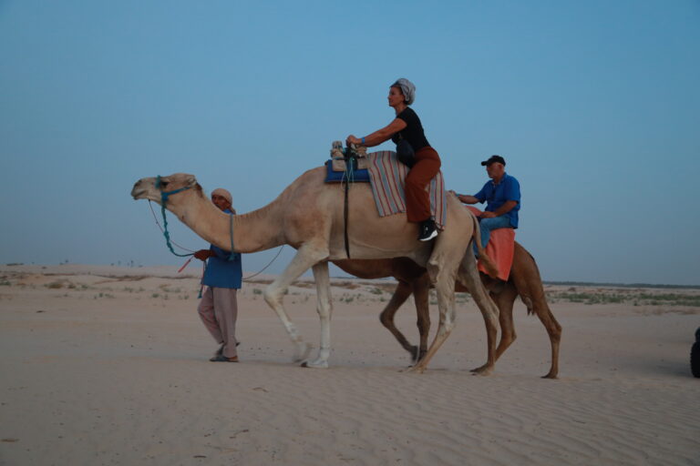 Circuit et Excursion Sahara Fête de Pâques en Tunisie privée avec SudTunisie.com Passer les vacances de Pâques dans le désert du Sahara tunisien, c’est bien plus qu’un simple voyage : c’est une aventure humaine, une immersion dans des paysages à couper le souffle, un retour à l’essentiel. Chez SudTunisie.com, nous vous proposons des circuits privés sur mesure, au départ de Tunis, Hammamet, Sousse, Monastir, Sfax, Djerba, Gabès, Bizerte, Kélibia et Korba, pour vivre une expérience inoubliable entre dunes dorées, villages berbères et nuits étoilées. 🌅 Une aventure unique au cœur du Sahara tunisien Imaginez-vous au lever du soleil, le sable encore frais sous vos pieds, un silence absolu brisé seulement par le vent du désert. C’est ici que commence la magie du Sahara tunisien, dans une atmosphère paisible et mystique, parfaite pour une escapade de Pâques. Nos circuits et excursions privées vous permettent d’explorer les plus beaux sites du Sud : Douz, Tozeur, Matmata, Tataouine, Ksar Ghilane, Tamerza, Chebika… Chaque étape est une carte postale vivante. Grâce à notre service de navette aéroport privé (voir le service ici ), vous pouvez arriver sereinement, que ce soit à Djerba, Tozeur ou même Tunis. Nous prenons tout en charge dès votre arrivée. 🧭 Nos circuits Sahara pour Pâques : liberté, confort et authenticité Circuit 1 : L’incontournable Tozeur – Douz – Ksar Ghilane Ce circuit de 4 à 6 jours est idéal pour une première immersion. Vous découvrirez : Les oasis de montagne de Tamerza et Chebika, véritables bijoux naturels. Le Chott El Jérid, ce lac salé immense qui change de couleur selon la lumière. Le village troglodytique de Matmata, célèbre pour ses habitations creusées dans la roche. Et enfin, les dunes infinies de Ksar Ghilane, où vous passerez une nuit magique sous les étoiles, dans un camp berbère tout confort. Vous pouvez découvrir le programme complet sur notre page dédiée aux circuits désert . Circuit 2 : Expérience premium “Sahara & Culture berbère” Pour ceux qui veulent aller plus loin, ce circuit combine culture, détente et aventure : Balade à dos de dromadaire au coucher du soleil, Rencontres avec des familles berbères, Découverte des ksours (greniers fortifiés), Visite de Tataouine et Chenini, des lieux chargés d’histoire. Les hébergements varient entre lodges de charme, maisons d’hôtes et bivouacs luxueux, pour une expérience authentique mais confortable. ✨ Pourquoi partir à Pâques ? La saison idéale La Fête de Pâques tombe au printemps, une saison parfaite pour explorer le Sahara. Les températures sont douces, les journées lumineuses, et les nuits légèrement fraîches — idéales pour dormir sous la tente. De plus, c’est une période où la nature renaît : les oasis se parent de vert, les palmiers donnent leurs premières dattes, et les marchés regorgent de couleurs et de senteurs. À Pâques, vous pouvez aussi combiner votre circuit désert avec une randonnée dans le Sahara montagneux : découvrez des panoramas grandioses et des sentiers oubliés avec nos guides passionnés (voir nos randonnées ici ). 🏜️ L’expérience SudTunisie.com : entre aventure et confort Chez SudTunisie.com, nous croyons qu’un voyage réussi, c’est un mélange parfait entre organisation professionnelle et chaleur humaine. Nos circuits sont pensés pour offrir : Des guides experts et passionnés Nos guides connaissent le désert comme leur poche. Ils vous emmèneront hors des sentiers battus, partageront des anecdotes locales, et vous feront découvrir la Tunisie authentique, loin des circuits touristiques standardisés. Des véhicules tout-terrain adaptés Tous nos déplacements se font en 4x4 climatisés, pour un confort optimal sur les pistes sahariennes. Chaque véhicule est piloté par un chauffeur expérimenté, formé à la conduite en terrain désertique. Des hébergements soigneusement sélectionnés Nous choisissons des auberges, hôtels et camps sahariens offrant un excellent rapport qualité-prix. Selon vos envies, vous pouvez dormir : Dans un campement de luxe sous tente berbère, Dans un hôtel à Tozeur ou Douz, Ou dans une maison d’hôtes typiquement tunisienne, au cœur d’un village oasien. Des repas locaux et savoureux Vous dégusterez une cuisine typique : couscous, tajine, méchoui, pain cuit sous le sable, dattes fraîches, thé à la menthe… Nos circuits incluent les repas pour une immersion totale dans la gastronomie saharienne. 🌍 Départs depuis toutes les grandes villes de Tunisie Pour vous simplifier la vie, nous organisons des transferts et départs depuis plusieurs villes : Tunis, Hammamet, Sousse, Monastir, Sfax, Djerba, Gabès, Bizerte, Kélibia et Korba. Peu importe où vous êtes, nous venons vous chercher à votre hôtel ou à votre domicile. Vous pouvez également profiter de notre navette aéroport pour plus de confort (plus d’informations ici ). 🔥 Les moments forts de votre circuit Sahara à Pâques 1. Lever de soleil sur les dunes Un spectacle indescriptible. L’horizon se teinte d’or et de rose, le silence absolu, la lumière parfaite pour des photos inoubliables. 2. Nuit sous les étoiles Dormir dans le désert est une expérience magique. Autour du feu, les guides préparent le dîner, racontent des histoires, et la voie lactée s’étend au-dessus de vous. 3. Rencontre avec les habitants Vous partagerez un thé, un repas ou un moment simple avec les familles locales. L’hospitalité tunisienne est légendaire. 4. Randonnée ou balade à dos de dromadaire Pour les amateurs de nature et de calme, la randonnée saharienne est un must (voir nos randonnées ici ). 🧳 Conseils pratiques pour votre excursion Sahara de Pâques Avant le départ, voici quelques recommandations utiles : Prévoyez des vêtements légers pour la journée et chauds pour la nuit. Portez un chapeau ou un foulard pour vous protéger du soleil. Emportez une crème solaire, des lunettes et une lampe frontale. Chaussures de marche confortables obligatoires pour les randonnées. N’oubliez pas votre appareil photo : chaque instant est photogénique ! 💬 Ce que disent nos voyageurs Nos voyageurs reviennent enchantés par la beauté du désert et la qualité de nos prestations. Découvrez leurs avis sur TripAdvisor : voir les témoignages ici . Leurs commentaires parlent d’eux-mêmes : accueil chaleureux, circuits bien pensés, authenticité garantie. 💡 Pourquoi choisir SudTunisie.com pour votre Fête de Pâques ? Circuits 100 % personnalisables Départs depuis toutes les grandes villes Guides locaux expérimentés Service de navette aéroport privé Tarifs justes et transparents Assistance 24h/24 et 7j/7 Vous n’avez qu’à nous indiquer vos envies et nous nous occupons du reste. 📞 Réservez votre circuit Sahara privé dès maintenant La Fête de Pâques est une période très demandée, pensez à réserver votre place à l’avance pour garantir les meilleurs hébergements. Demandez dès maintenant votre devis gratuit et personnalisé : 👉 https://sudtunisie.com/devis-voyage-desert-sud-tunisie-vacances-pas-cher-tunisie-sahara-tunisie/ Notre équipe vous répond rapidement avec une proposition complète selon vos dates, votre budget et vos envies. 🗺️ Pour aller plus loin : nos autres expériences à découvrir Circuits dans le désert tunisien : https://sudtunisie.com/voyage/circuits-desert/ Randonnée montagne Sahara : https://sudtunisie.com/voyage/randonnee-montagne-sahara/ Excursions en Tunisie : https://sudtunisie.com/voyage/excursion-en-tunisie/ Blog & récits de voyages : https://sudtunisie.com/voyage/blog-excursions-tunisie/ Ces pages vous aideront à préparer au mieux votre prochaine aventure dans le Sud tunisien. 🌴 En résumé : une escapade saharienne à vivre au moins une fois dans sa vie Le Sahara tunisien n’est pas un simple désert. C’est une terre de légendes, un lieu de déconnexion totale où le temps semble suspendu. Passer Pâques dans le Sahara avec SudTunisie.com, c’est choisir la liberté, la beauté et l’émotion. Que vous partiez de Tunis, Hammamet, Sousse, Monastir, Sfax, Djerba, Gabès, Bizerte, Kélibia ou Korba, nous vous garantissons une expérience authentique, respectueuse de la nature et profondément humaine. Vivez l’inoubliable, vivez le Sahara.