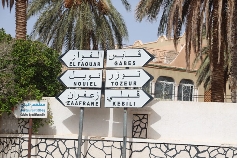 Le Sud tunisien ne se raconte pas, il se vit. Entre palmeraies de Tozeur, dunes dorées de Douz, sources chaudes de Ksar Ghilane et villages berbères perchés comme Chenini ou Douiret, chaque journée dans le Sahara est une surprise. Ici, nous dessinons des circuits désert sur-mesure et des excursions authentiques qui mêlent paysages grandioses, rencontres locales et confort bien pensé. Que vous voyagiez en couple, en famille avec enfants, entre amis ou en petit groupe, nous créons l’itinéraire qui vous ressemble — sans fioritures, mais avec l’essentiel : de la liberté, de la sécurité et beaucoup d’émotion. 👉 Envie d’un aperçu des itinéraires ? Parcourez nos circuits désert en Tunisie et inspirez-vous. Pourquoi choisir le Sud tunisien pour votre prochaine aventure ? Le Sahara tunisien coche toutes les cases d’un voyage mémorable : Diversité des paysages : des chotts (lacs salés) scintillants au Grand Erg Oriental, des canyons de Mides aux oasis de montagne (Chebika, Tamerza), sans oublier les ksour de Tataouine et les maisons troglodytes de Matmata. Culture vivante : thé à la menthe partagé avec un chamelier, dîner de couscous ou méchoui sous le ciel étoilé, musique locale et contes du désert autour du feu. Aventure accessible : balades à dos de dromadaire, 4×4, quad, sandboard, randonnées dans les dunes au lever du soleil ou à la fraîche. Climat idéal d’octobre à avril : journées douces pour explorer, soirées fraîches façon “pull et ciel constellé”. Pour un avant-goût de nos sorties à la journée, jetez un œil à notre sélection d’excursions en Tunisie — parfait pour combiner détente et découverte. Nos circuits désert sur-mesure : du week-end escapade au grand raid saharien Nous concevons des circuits personnalisés selon votre rythme, vos envies d’immersion et votre confort souhaité (hôtel, maison d’hôtes, campement fixe, *bivouac luxe ou “roots”). Voici quelques exemples d’itinéraires que nous ajustons à la carte. Pour plus d’idées, explorez nos propositions de circuits dans le désert . 3 jours – Tozeur, Chott el Jerid, Ong Jmel & Douz : condensé de Sahara Points forts : Chott el Jerid au lever du jour, décors de cinéma à Ong Jmel (Mos Espa), balade à dos de dromadaire dans les dunes de Douz, nuit sous tente. Itinéraire suggéré : Jour 1 : Arrivée à Tozeur. Découverte de la médina de brique ocre, palmeraies, musée des arts et traditions. Coucher de soleil au Chott el Jerid. Jour 2 : Ong Jmel et les dunes de Nefta, puis route vers Douz. Camélidé au crépuscule, dîner au camp sous les étoiles. Jour 3 : Matinée libre (quad, sandboard), retour sur Tozeur. Option oasis de montagne (Chebika, Tamerza) si votre vol est tardif. 4 jours – Matmata, Ksar Ghilane, Chenini & Tataouine : ksour et sources chaudes Points forts : Maisons troglodytes de Matmata, baignade dans la source chaude de Ksar Ghilane, ksour de Tataouine, coucher de soleil à Chenini. Itinéraire suggéré : Jour 1 : Djerba → Matmata (déjeuner chez l’habitant). Fin de journée Ksar Ghilane, bain thermal et nuit en camp. Jour 2 : Dunes au matin, pistage en 4×4 vers Tataouine, visite des ksour (Ksar Ouled Soltane, Ksar Haddada). Jour 3 : Chenini et Douiret, balade douce et panorama. Nuit à Tataouine. Jour 4 : Retour via paysages lunaires et ateliers d’artisans. 7 à 8 jours – Grande itinérance : dunes profondes & randonnée saharienne Points forts : Immersion progressive dans le Grand Erg Oriental, bivouacs nomades, marche douce sur crêtes, astronomie “à l’œil nu”. Rythme et esprit : Nous alternons randonnée (2–4 h/jour) et transferts courts pour atteindre les plus belles dunes loin des foules. Les équipes locales dressent le bivouac confortable (tentes, matelas, cuisine traditionnelle). Idéal pour se déconnecter vraiment. Pour approfondir l’expérience nature, découvrez nos idées de randonnée Sahara & montagne , du canyon aux dunes, en passant par les oasis de montagne. Top des excursions d’une journée : oasis, canyons, Star Wars et dunes dorées Vous avez peu de temps ? Nous proposons des excursions calibrées “waouh” sans courir. Retrouvez tout le catalogue sur nos excursions en Tunisie . Oasis de montagne (Chebika, Tamerza, Mides) : cascades, sentiers accessibles, points de vue vertigineux. Ong Jmel & Mos Espa : les décors mythiques au bout de la piste, dunes photogéniques à souhait. Chott el Jerid : mers de sel et mirages, lever de soleil inoubliable. Douz “porte du désert” : dromadaires, quad, sandboard pour une dose d’adrénaline maîtrisée. Matmata troglodyte : architecture vernaculaire et déjeuner chez l’habitant. Ksour de Tataouine : greniers fortifiés, mémoire du blé et du vent, photos carte postale garanties. Expériences incontournables : ce que vous adorerez (et que vous raconterez à vos proches) Bivouac confort sous les étoiles : nattes au sol, coussins, ciel 360°, silence du désert — et la voie lactée comme plafonnier. Dromadaire en fin de journée : une allure lente qui vous connecte au paysage. Thé & pain de sable : simplicité, partage, parfum de braise. Sandboard : facile, ludique, sans besoin d’expérience. Astronomie à l’œil nu : repérer Orion, Mars, la Croix du Sud selon la saison, et écouter les histoires du guide. Photographie : l’or du matin, l’ambre du soir, et ces dunes striées qui font toute la différence. Quand partir, quoi mettre dans la valise : nos conseils terrain Meilleure période : octobre → avril. Chaud mais supportable en journée, frais la nuit — idéal pour marcher et dormir sous tente. À emporter (check-list intelligente) : Coupe-vent léger + polaire pour les soirées. Chaussures fermées (type trail) + tongues pour le bivouac. Chèche/écharpe, lunettes solaires, chapeau. Crème solaire, baume à lèvres, savon biodégradable. Gourde (1 L mini) — nous rechargeons au fur et à mesure. Batterie externe, lampe frontale. Pharmacie perso (anti-viroles, pansements, traitement habituel). Logistique simple : navette aéroport, hébergements et camps cosy Pas envie de vous casser la tête avec les transferts ? Notre service de navette aéroport vous récupère à Tozeur, Djerba ou Tunis selon votre vol et vous conduit directement à l’hébergement ou au départ du circuit. Côté nuitées, nous privilégions : Maisons d’hôtes de caractère, Hôtels sélectionnés pour leur emplacement, Camps désert confort (tentes équipées, sanitaires), Bivouacs privatifs selon votre envie d’isolement et d’authenticité. Budget, familles, groupes : comment optimiser le coût de votre circuit ? Le prix dépend de la durée, du nombre de participants, du niveau de confort, des activités optionnelles (quad, cheval, sandboard guidé), des repas inclus et de la logistique (pistes, 4×4, dromadaires, équipes). Nous avons des solutions pour tous les budgets, sans sacrifier la qualité : itinéraires malins, hébergements au meilleur rapport authenticité/prix, et options modulables. Pour une estimation précise, obtenez un devis gratuit et immédiat . Dites-nous vos dates, vos envies, votre idée de budget, et nous vous retournons une proposition claire (sans surprise, ni frais cachés). Itinéraires thématiques : choisissez votre fil conducteur “Dunes & Étoiles” (2–3 jours) : grands classiques du désert, dromadaire au coucher du soleil, bivouac cosy, photos dorées. “Ksour & Mémoire du Sud” (3–4 jours) : Tataouine, Chenini, Douiret, Ksar Ouled Soltane, haltes artisanales. “Oasis & Canyons” (1 jour) : Chebika, Tamerza, Mides — nature + baignade selon saison. “Randonnée saharienne douce” (5–8 jours) : marche facile, dunes lointaines, bivouacs nomades, lenteur assumée (voir nos idées randonnée Sahara ). “Ciné-désert & Star Wars” (1 jour) : piste d’Ong Jmel, décor de Mos Espa, pauses photo dans les ergs. Plus d’inspiration ? Notre blog des excursions en Tunisie publie conseils, récits, mises à jour d’itinéraires et idées de saison. Sécurité, guides et éthique locale : ce qui compte pour nous Guides locaux formés : professionnels du désert, francophones, habitués des familles. Brief quotidien : météo, rythme, options — on s’adapte à votre forme et à votre envie du moment. Respect des lieux : zéro trace, eau gérée avec soin, économie locale valorisée (artisans, éleveurs, cuisiniers). Confort raisonnable : tentes spacieuses, repas chauds, pauses régulières — l’aventure oui, l’inconfort inutile non. Vous hésitez entre plusieurs formats ? Comparez nos circuits désert et écrivez-nous pour un devis personnalisé : contact & devis gratuit . Avis & communauté : lisez les retours, partagez votre expérience Rien ne vaut la parole des voyageurs. Consultez nos avis certifiés et laissez, vous aussi, un commentaire après votre retour : 👉 Avis clients Sud Tunisie – TripAdvisor . Pour prolonger le voyage, suivez nos nouvelles idées sur le blog des excursions et nos sélections d’excursions à la journée . FAQ express – tout ce qu’on nous demande souvent Combien de temps faut-il pour “sentir” le désert ? Dès 2 jours, vous goûtez déjà à l’essentiel : dunes, coucher de soleil, nuit sous tente. En 4 jours, vous mixez oasis + ksour + source chaude. En 7–8 jours, vous vivez la grande itinérance. Et avec des enfants ? Oui, nos circuits sont kids-friendly : durées de trajets raisonnables, pauses jeu, dromadaire très apprécié. On ajuste le rythme pour garder le plaisir intact. On dort comment ? Selon votre choix : maisons d’hôtes, hôtels, camps désert, bivouacs privatifs. Toujours propres, confortables et bien situés. Quel niveau physique ? De très facile (balades courtes, transferts en 4×4) à modéré (randonnée 2–4 h). Les circuits randonnée sont décrits en détail ici : randonnée montagne & Sahara . Comment arrivent-on au point de départ ? Nous assurons la navette aéroport (Tozeur, Djerba, Tunis) pour vous simplifier la vie. Quel budget prévoir ? Ça dépend de la durée et du niveau de confort. Pour une estimation en 2 minutes, demandez un devis gratuit . Où trouver des idées et retours terrain ? Sur nos pages circuits désert , excursions et notre blog . Et bien sûr, les avis TripAdvisor . Comment réserver votre circuit et personnaliser votre programme Choisissez une base parmi nos circuits désert ou nos excursions . Dites-nous vos envies (dunes lointaines ? oasis ? plus de rando ? plus de confort ?). Recevez un devis clair via contact & devis gratuit . Arrivez sereins : notre navette aéroport s’occupe du reste. Envie de creuser un thème ? Notre page randonnée montagne & Sahara détaille les marches douces, les profils de dénivelé (faibles), les temps de parcours et l’esprit de nos bivouacs. Pourquoi nous confier votre “Grand Sud” : promesse, méthode, résultats Écoute : on part de vos priorités, pas d’un programme figé. Rythme juste : des journées pleines mais jamais “à la montre”. Souplesse : météo, fatigue, coups de cœur — on ajuste. Ancrage local : équipes 100 % sahariennes, circuits pensés “terrain”. Transparence : des prix nets, pas de frais cachés. Plaisir : ce petit supplément d’âme qui transforme un voyage en souvenir de vie. Prêts pour votre Circuit et Excursion Sud Tunisie ? Inspirez-vous avec nos circuits désert prêts à personnaliser , picorez des idées dans notre blog d’excursions , puis demandez votre devis gratuit . Et une fois rentrés, n’oubliez pas de partager votre expérience ici : vos avis nous guident . Liens utiles (à garder sous la main) Circuits désert : sudtunisie.com/voyage/circuits-desert Randonnée Sahara & montagne : sudtunisie.com/voyage/randonnee-montagne-sahara Excursions en Tunisie : sudtunisie.com/voyage/excursion-en-tunisie Blog Excursions Tunisie : sudtunisie.com/voyage/blog-excursions-tunisie Navette aéroport : sudtunisie.com/services-navette-aeroport Devis gratuit / contact : sudtunisie.com/devis…/ Avis clients : TripAdvisor – Sud Tunisie Cap sur le Sud ? On s’occupe de tout. Vous n’avez plus qu’à respirer, regarder, profiter.