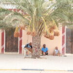 Envie de couper avec le quotidien, de vivre une parenthèse d’authenticité au cœur du désert ? Chez SudTunisie.com, nous vous proposons un circuit Sahara 2 jours et 1 nuitée sous tente, un voyage court mais intense, riche en émotions, paysages grandioses et rencontres inoubliables. Que vous partiez de Tunis, Hammamet, Sousse, Monastir, Sfax, Djerba, Gabès, Bizerte, Korba ou Kélibia, notre équipe organise pour vous une escapade privée et entièrement personnalisée à la découverte des plus beaux coins du Sahara tunisien. 🌅 Une aventure saharienne authentique et confortable Un dépaysement total en seulement deux jours Vous n’avez pas besoin de partir loin pour vivre une expérience unique : en deux jours seulement, plongez dans un univers fascinant fait de dunes dorées, d’oasis verdoyantes et de silence apaisant. Notre excursion Sahara est idéale pour ceux qui veulent profiter d’une immersion rapide mais complète dans la magie du désert, sans renoncer au confort. Dès votre départ depuis votre ville (Tunis, Hammamet, Sousse, Monastir, Sfax, Djerba, etc.), notre service de navette privée (voir : SudTunisie.com – Navette aéroport ) vous prend en charge. Ensuite, direction le sud ! Douz, Tozeur, Ksar Ghilane ou Matmata deviennent le théâtre de votre aventure. Un programme pensé pour les voyageurs curieux et actifs Notre circuit Sahara 2 jours/1 nuit sous tente est parfaitement équilibré : entre découvertes culturelles, balades dans les dunes, gastronomie locale et détente autour du feu. Laissez-vous guider par nos chauffeurs et guides passionnés : ils connaissent chaque piste, chaque oasis, chaque légende du désert tunisien. 🏜️ Itinéraire type : 2 jours d’évasion au cœur du Sahara Jour 1 – Cap vers le désert et immersion dans les dunes Départ tôt le matin depuis votre ville ou hôtel (Tunis, Hammamet, Sousse, Monastir, Sfax, Djerba, Gabès…). Trajet en véhicule confortable 4x4 ou minibus vers le sud. Pause déjeuner en route dans une auberge locale. Arrivée à Douz, la porte du désert : c’est ici que commence votre aventure saharienne. Balade à dos de dromadaire pour admirer le coucher du soleil sur les dunes du Grand Erg. Installation dans le campement : tentes berbères traditionnelles ou lodges confortables. Dîner typique sous les étoiles, autour du feu de camp, au son du tambour et des chants nomades. Nuit magique dans le silence absolu du désert. Jour 2 – Lever du soleil et retour tout en douceur Réveil au lever du soleil pour admirer les couleurs dorées du Sahara. Petit-déjeuner au campement. Balade libre dans les dunes ou visite d’une oasis (comme Ksar Ghilane, célèbre pour sa source chaude naturelle). Déjeuner dans un restaurant local. Retour vers votre ville de départ dans l’après-midi. Arrivée en fin de journée, des souvenirs plein la tête. 👉 Pour explorer d’autres circuits et extensions dans le Sahara, consultez notre page dédiée : Circuits désert Tunisie – SudTunisie.com 🌌 Une nuit sous tente dans le Sahara : un moment d’émotion pure Dormir sous une tente dans le désert est une expérience inoubliable. Le ciel étoilé s’étend à perte de vue, le silence est total, et la douceur du vent rend l’instant presque irréel. Nos camps sahariens sont installés dans des zones paisibles, sécurisées et équipées de tout le nécessaire pour votre confort : matelas épais, couvertures, sanitaires, douches et espace repas. Vous pouvez choisir entre : Tente berbère traditionnelle (expérience authentique, rustique et intime). Tente confort / lodge de luxe (avec lit, électricité et salle de bain privative). Les repas sont cuisinés sur place : couscous aux légumes, tajines, pain traditionnel cuit dans le sable chaud, dattes fraîches et thé à la menthe. Un vrai festin nomade ! 🌴 Les trésors du Sud tunisien à découvrir sur votre route Douz, la porte du désert Ville emblématique du Sahara, Douz est le point de départ de la plupart des circuits dans le désert. Son marché traditionnel et son festival du Sahara en font un lieu culturel fort. Ksar Ghilane et sa source d’eau chaude Cette oasis mythique est connue pour son bassin d’eau chaude naturelle entouré de palmiers. Une baignade ici après une balade dans le désert est un pur bonheur. Matmata et ses habitations troglodytes Sur la route du retour, un détour par Matmata s’impose : vous découvrirez les fameuses maisons creusées dans la roche, rendues célèbres par le film Star Wars. Les montagnes du Dahar et les ksours berbères Les villages fortifiés, appelés ksours, témoignent d’un passé riche et d’un savoir-faire architectural fascinant. Pour les amateurs de marche, explorez aussi nos randonnées montagne dans le Sahara pour une aventure encore plus complète. 🧭 Pourquoi choisir SudTunisie.com pour votre circuit Sahara ? Une expertise locale et une organisation sans faille Basés dans le Sud tunisien, nous connaissons chaque piste, chaque camp, chaque partenaire. Nos circuits sont conçus par des guides sahariens expérimentés, amoureux de leur région. Notre objectif : vous faire découvrir un Sahara authentique, sécurisé et respectueux de la nature. Un service complet et flexible Nous prenons en charge votre transfert, votre hébergement, vos repas et vos activités. Nos excursions s’adaptent à tous les profils : couples, familles, groupes d’amis ou voyageurs solos. Vous pouvez même prolonger l’aventure avec une excursion en Tunisie d’une journée ou un circuit plus long. Des avis clients qui parlent d’eux-mêmes Nos voyageurs partagent leurs expériences sur TripAdvisor : 👉 Lisez leurs témoignages ici Leur satisfaction reflète notre engagement à offrir des séjours de qualité, toujours personnalisés. Un tarif juste et transparent Pas de mauvaises surprises : nos prix incluent le transport, la pension complète, les excursions et le guide. Pour obtenir une estimation détaillée, demandez dès maintenant votre devis gratuit ici : 👉 Demander un devis personnalisé 🔥 Les points forts de notre circuit Sahara 2 jours / 1 nuit 🚙 Transport en 4x4 climatisé 🏜️ Balade en dromadaire au coucher du soleil 🏕️ Nuit sous tente berbère traditionnelle ou lodge confort 🍲 Repas typiques et faits maison 🧭 Guide saharien francophone expérimenté 💧 Visite d’oasis et possibilité de baignade naturelle 🎶 Soirée musicale et feu de camp 📸 Paysages à couper le souffle Chaque détail compte : c’est ce qui rend nos circuits uniques et mémorables. 🌍 Autres expériences à ne pas manquer avec SudTunisie.com Circuits désert Tunisie : explorez nos formules 3, 5 ou 7 jours. Randonnées et montagnes du Sahara : pour les amoureux de nature sauvage. Excursions en Tunisie : visites culturelles, plages, villages berbères. Blog voyage Sahara Tunisie : récits, conseils et photos inspirantes. 💬 Ils ont vécu l’expérience SudTunisie.com “Deux jours magiques entre dunes et étoiles. Une organisation parfaite et des guides adorables. Le feu de camp reste un souvenir gravé !” — Sarah et Karim, Marseille “Départ depuis Djerba, arrivée à Douz, balade en dromadaire, nuit sous tente, bain à Ksar Ghilane... tout était fabuleux !” — Lucie, Paris “Merci à SudTunisie.com pour cette parenthèse hors du temps. Une équipe aux petits soins et une expérience authentique.” — Ali, Hammamet 📅 Informations pratiques avant votre départ Durée : 2 jours / 1 nuit Départs garantis : tous les jours depuis Tunis, Hammamet, Sousse, Monastir, Sfax, Djerba, Gabès, Bizerte, Korba, Kélibia Climat : chaud le jour, frais la nuit (prévoir une veste légère) Tenue conseillée : vêtements légers, foulard, lunettes de soleil, crème solaire, chaussures confortables Âge minimum : dès 4 ans (adapté aux familles) Période idéale : d’octobre à avril 📞 Réservez votre aventure dans le Sahara dès maintenant Ne manquez pas cette expérience unique ! Que vous voyagiez en couple, en famille ou entre amis, notre circuit Sahara 2 jours / 1 nuit sous tente est l’escapade parfaite pour vivre la magie du désert tunisien. Demandez dès maintenant votre devis gratuit sur : 👉 https://sudtunisie.com/devis-voyage-desert-sud-tunisie-vacances-pas-cher-tunisie-sahara-tunisie/ Et pour préparer votre aventure ou lire des récits inspirants, explorez notre blog dédié aux excursions en Tunisie . SudTunisie.com, votre partenaire de confiance pour découvrir la Tunisie autrement – authentique, naturelle et inoubliable.