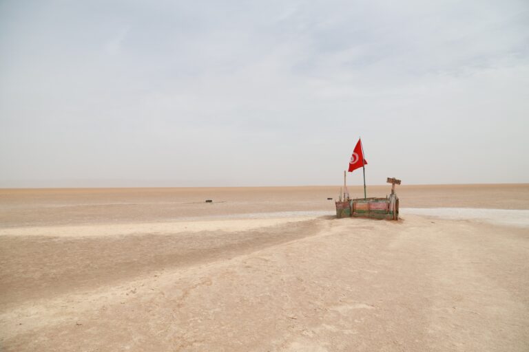 Quand on pense circuits et excursions en Tunisie, on imagine des dunes dorées à perte de vue, des oasis secrètes nichées dans les montagnes et des villages troglodytes qui racontent des siècles d’histoire. Nous concevons des itinéraires sur mesure, du city-break culturel aux immersions 100 % désert, pour que vous profitiez du meilleur du pays — sans prises de tête, avec une logistique fluide et des guides passionnés. Que vous rêviez d’un bivouac sous les étoiles, d’une traversée du Chott El Jerid, ou d’une balade dans les palmeraies de Tozeur, nous avons le circuit qu’il vous faut. Découvrez ci-dessous nos routes emblématiques, nos conseils de pro et nos services pratiques pour un voyage aussi simple qu’inoubliable. Envie de parcourir nos circuits désert ? Jetez un œil ici : circuits dans le désert tunisien . Pourquoi choisir la Tunisie pour votre circuit ? Diversité, authenticité et proximité La Tunisie, c’est un concentré d’expériences sur un territoire facile à parcourir : en quelques heures, on passe des rues blanches de Djerba aux canions ocre de Tamerza, puis aux dunes de Ksar Ghilane. Le climat est doux la majeure partie de l’année, les distances sont raisonnables, et l’accueil est chaleureux. Nous aimons la Tunisie parce que : La variété des paysages : désert du Grand Erg oriental, montagnes de l’Atlas, lagunes et îles, oasis et steppes. Un patrimoine unique : ksour de Tataouine, villages troglodytes de Matmata, médinas animées, vestiges romains et mosaïques. Une gastronomie généreuse : couscous, méchoui, briks croustillants, dattes de Tozeur, huile d’olive parfumée. Une logistique simple : navettes aéroport fiables, bons hébergements, routes principales bien entretenues. → Besoin d’un transfert privé ? Réservez nos services de navette aéroport . Circuits désert Tunisie : nos itinéraires phares, du 2 au 8 jours (et plus) On ne voyage pas de la même manière en 2 jours qu’en 8 jours. Voici nos formules éprouvées, modulables selon votre rythme, votre budget et la saison. Chaque circuit reste adaptable : durée, hébergements (campement, maison d’hôtes, hôtel 4★), activités (quad, dromadaire, 4x4, randonnée), etc. 2–3 jours : première immersion dans le Sahara Idéal si vous avez peu de temps (départ Djerba, Tozeur ou Douz) et que vous voulez vivre un coucher de soleil sur les dunes. Jour 1 : route vers Douz, porte du désert. Balade à dos de dromadaire au crépuscule, dîner typique, nuit en campement. Jour 2 : piste vers Ksar Ghilane, baignade dans la source chaude naturelle, visite du fort romain, déjeuner au camp, retour. Option Jour 3 : Matmata et les maisons troglodytes, puis Tataouine et ses ksour (Ksar Ouled Soltane, Chenini). Envie de réserver rapidement ? Demandez un devis clair et gratuit via notre page contact : demande de devis & contact . 4–5 jours : dunes, oasis de montagne et chott scintillant Le format parfait pour diversifier les paysages sans courir. Jour 1 – Tozeur : découverte de la palmeraie, du quartier d’Ouled el Hadef, et du marché local. Jour 2 – Oasis de montagne : Chebika, Tamerza, Mides : gorges, cascades, panoramas à couper le souffle. Jour 3 – Chott El Jerid : traversée des miroirs de sel, pause photo sur l’horizon lacté, arrivée à Douz. Jour 4 – Sahara : 4x4 au Grand Erg oriental, déjeuner méchoui sous tente, bivouac aux mille étoiles. Jour 5 – Ksar Ghilane / Matmata : contraste oases–troglodytes, retour à votre ville de départ. Pour voir plus d’idées « à la journée » partout dans le pays, parcourez nos excursions en Tunisie : toutes nos excursions . 7–8 jours (ou +) : Grand Sud complet, des ksour à l’Erg Pour ceux qui veulent prendre le temps de vivre la Tunisie en profondeur. Tozeur & Ong Jmel : dunes cinématographiques et pistes de sel. Douz & l’Erg : deux nuits en campement pour profiter de la voie lactée (selon météo). Tataouine & ksour : Chenini, Guermessa, Ksar Ouled Soltane ; balades entre greniers fortifiés et villages berbères. Djerba : pause iodée, médina d’Houmt Souk, ateliers d’artisans, gastronomie de la mer. Matmata : immersion dans l’habitat troglodyte et rencontre avec les hôtes du désert. Vous souhaitez un programme 100 % désert et montagne avec marches quotidiennes ? Nos circuits sont compatibles avec la randonnée encadrée : découvrez nos idées de trek en Tunisie ici : randonnée montagne & Sahara . Excursions et micro-aventures : vivez la Tunisie au jour le jour Les excursions sont idéales pour optimiser un court séjour ou ajouter des expériences à un circuit. Parmi les plus demandées : Star Wars & désert (région de Tozeur) : décor d’« Ong Jmel », dunes et villages oasiens. Oasis de montagne : Chebika, Tamerza, Mides en une journée, avec pause déjeuner locale. Ksar Ghilane depuis Djerba : bain thermal dans l’oasis, 4x4 et dromadaire selon envie. Matmata troglodyte : rencontre avec les habitants, découverte des maisons souterraines. Île de Djerba : tour complet (mosquée Fadhloun, Guellala, Houmt Souk) avec artisanat et déjeuner de la mer. Composez votre journée idéale via notre sélection d’excursions en Tunisie , puis approfondissez avec nos récits et conseils sur le blog des excursions en Tunisie . Randonnée en Tunisie : du sable aux canyons Envie d’effort doux, de silence et d’horizons ? Nos randos alternent dunes, plateaux, palmeraies et gorges. Nous proposons des parcours adaptés à tous : Balades familiales : 1–2 h en fin d’après-midi autour des palmeraies et dunes basses. Randos demi-journée : vallées de Tamerza, crêtes de Chebika, plateaux surplombant le chott. Trek désert (2–5 jours) : progression dunaire, nuits en bivouac, cuisine au feu de bois, bains de sable (selon saison). Toutes nos idées de marches sont rassemblées ici : randonnée montagne & Sahara . Logistique clé en main : transferts, hébergements, repas Un bon voyage commence par une logistique impeccable. Nous mettons l’accent sur : Transferts aéroport : accueil personnalisé, horaires adaptés à vos vols, véhicules confortables. → Réservez simplement vos trajets via nos navettes aéroport . Hébergements : sélection de maisons d’hôtes, hôtels ou campements au plus près de l’authenticité (et de votre confort). Repas : cuisine locale, options végétariennes sur demande, eau à disposition, pauses gourmandes (dattes, figues, olives). Guides certifiés : passionnés, bilingues ou trilingues, attentifs à votre rythme et à la sécurité. Quand partir ? Météo, saisons et périodes idéales La meilleure période pour les circuits désert s’étend d’octobre à avril, avec des journées douces et des nuits fraîches (prévoir une polaire). De mai à septembre, on privilégie les oasis de montagne, la Méditerranée et les excursions matinales ou en fin de journée. Astuces : Hiver (déc.–févr.) : superbes ciels, nuits froides → sac de couchage chaud pour les bivouacs. Printemps (mars–avr.) : fleurs dans les palmeraies, sable plus ferme, très populaire. Automne (oct.–nov.) : dunes parfaites, températures idéales, luminosité extraordinaire. Été (juin–sept.) : focus Djerba et oasis avec départs tôt/retours tard. Que mettre dans votre sac ? Le kit simple et efficace Inutile de vous surcharger. Prévoyez : lunettes de soleil, casquette, foulard (utile contre le sable), crème solaire, veste coupe-vent pour le soir, chaussures fermées (type trail ou marche), gourde réutilisable. Un chargeur externe, des lingettes et une lampe frontale pour le bivouac rendent la vie plus facile. Côté tenue, couches légères à superposer et tons neutres pour les photos dans le désert ! Engagement local et tourisme responsable Nous privilégions les cuisinières et artisans locaux, rémunérons justement nos chauffeurs et guides, réduisons les déchets sur les pistes (zéro plastique autant que possible), et choisissons des hébergements qui économisent l’eau. Nos circuits sont pensés pour respecter les écosystèmes et valoriser les savoir-faire. Voyager, oui — mais mieux. Exemples de journées « signature » à insérer dans votre circuit Lever de soleil sur l’Erg : départ de nuit, marche légère sur les crêtes, petit-déjeuner servi face au soleil naissant. Déjeuner sous la khaïma : pain de sable, salades locales, thé à la menthe, temps calme. Coucher de soleil à Ksar Ghilane : teintes cuivrées, bain à la source, dîner au camp. Soirée contes et étoiles : mythes sahariens, identification de la voie lactée (selon ciel). Matmata en privé : échanges avec une famille troglodyte, plongeon dans la vie quotidienne. Pour personnaliser l’ordre, la durée et les activités, parcourez nos propositions modulables : circuits désert Tunisie . FAQ – Circuits & Excursions en Tunisie Quel circuit choisir si je n’ai que 2 jours ? Un Douz – Ksar Ghilane express, avec nuit en camp et balade dromadaire. Vous goûtez à l’essentiel du désert sans sacrifier le confort. Et si je voyage en famille ? Nous adaptons le rythme (pauses fréquentes, distances réduites), favorisons les hébergements calmes et ajoutons des activités ludiques (atelier poterie, initiation cuisine, balade en calèche dans la palmeraie). Peut-on randonner sans bivouac ? Bien sûr. Les oasis de montagne sont parfaites pour des marches à la demi-journée. Consultez nos idées : randonnée montagne & Sahara . Comment s’organisent les transferts ? Nous proposons des navettes aéroport privatives et ponctuelles : réserver un transfert . Où trouver des idées d’excursions à la journée ? Notre sélection est ici : excursion en Tunisie , et nos retours d’expérience sur le blog excursions Tunisie . Comment réserver facilement votre circuit ou excursion ? Inspirez-vous de nos pages : Circuits désert – idées & prix indicatifs Excursions partout en Tunisie Randonnée montagne & Sahara Dites-nous ce que vous aimez (nature, culture, photo, gastronomie), vos dates, votre budget et le confort souhaité. Recevez un itinéraire sur mesure avec une tarification transparente. Validez en toute simplicité : acompte sécurisé, transferts aéroport inclus sur demande. → Pour une réponse rapide, remplissez notre formulaire de devis gratuit : obtenir un devis personnalisé . → Vous préférez un premier contact direct ? Utilisez la page contact & devis : nous écrire maintenant . Avis voyageurs : votre voix compte Nous sommes fiers de nos retours clients et nous lisons chaque commentaire pour améliorer nos itinéraires. Après votre voyage, laissez un avis ou consultez les témoignages directement ici : Votre avis sur TripAdvisor – Sud Tunisie (Tozeur) Le petit plus qui fait la différence Flexibilité : heures de départ ajustées à la saison (pour profiter des lumières idéales). Accès privilégiés : sites photogéniques hors des heures d’affluence quand c’est possible. Sécurité : suivi météo/pistes quotidien, équipements vérifiés, chauffeurs expérimentés. Culture vivante : rencontres avec artisans, agriculteurs de la palmeraie, musiciens sahariens. Prêt à tracer votre route ? Que vous rêviez d’un road-trip saharien, d’un week-end d’évasion ou d’un grand voyage mélangeant désert, oasis et mer, nous construisons le circuit qui vous ressemble. Commencez par explorer nos idées d’itinéraires et contactez-nous pour personnaliser chaque détail. Circuits désert (modulables) : découvrir les itinéraires Excursions à la journée : choisir votre sortie Randonnée & trek : voir les parcours Navettes aéroport : organiser vos transferts Devis gratuit : recevoir une proposition sur mesure À très vite sur les pistes tunisiennes, là où les dunes écrivent la plus belle des histoires.