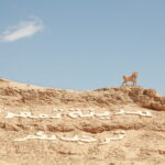 Circuit et Excursion Sahara 2 jours avec nuitée sous tente – une aventure authentique avec SudTunisie.com Vous rêvez de vivre une aventure unique dans le Sahara tunisien, de dormir sous une tente berbère au milieu des dunes et de sentir la magie du désert ? Chez SudTunisie.com, nous organisons des circuits et excursions de 2 jours avec une nuitée sous tente, adaptés à tous les voyageurs en quête d’authenticité, de silence et de déconnexion. Départs possibles depuis Tunis, Hammamet, Sousse, Monastir, Sfax, Djerba, Gabès, Bizerte, Kélibia ou Korba, pour une escapade saharienne pleine d’émotions et de découvertes. 🌅 Jour 1 – Cap vers le désert et première immersion dans le Sahara Dès le départ, notre équipe vient vous chercher à votre hôtel ou à l’aéroport grâce à notre service de navette aéroport , pour vous conduire vers les portes du Sahara, à Douz ou Ksar Ghilane selon votre point d’arrivée. Sur la route du désert La route vers le sud est déjà un voyage en soi. Vous traverserez les villages berbères, les oliveraies, les montagnes du Dahar et les oasis luxuriantes. Chaque étape révèle un nouveau visage de la Tunisie, entre nature, culture et tradition. Arrivée à Douz, surnommée la "porte du Sahara", vous ferez la rencontre de votre guide local. Ensemble, vous partirez en 4x4 ou à dos de dromadaire pour rejoindre votre campement au cœur des dunes. Installation au campement et soirée sous les étoiles À votre arrivée, le campement vous attend, chaleureux et typique, avec ses tentes berbères traditionnelles et sa vue panoramique sur les dunes dorées. Le temps d’un thé à la menthe, vous savourez ce silence unique que seul le désert peut offrir. Le soir, profitez d’un dîner saharien préparé sur place : tajine, couscous, pain cuit dans le sable, fruits frais… Un festin sous le ciel étoilé, rythmé par les tambours et les chants traditionnels. Puis vient le moment magique : s’endormir sous la tente, bercé par le souffle du vent et la lueur des étoiles. Une expérience rare, apaisante et inoubliable. 🌄 Jour 2 – Lever du soleil, balade et retour Le spectacle du lever du soleil Réveil matinal pour un moment d’une beauté saisissante : le lever du soleil sur les dunes du Sahara. Les couleurs changent à chaque minute, passant de l’orange au rose doré, jusqu’à inonder le désert d’une lumière éclatante. C’est un moment fort, souvent décrit par nos voyageurs comme "le plus beau souvenir du voyage". Balade en dromadaire ou randonnée Après un petit déjeuner typique, partez pour une balade à dos de dromadaire ou une petite randonnée dans les dunes. Laissez-vous guider par les nomades, découvrez leurs histoires, leurs traditions et leur rapport unique à la nature. Vous ferez halte dans une petite oasis cachée, pour y découvrir la vie des nomades, la culture des dattes, et le charme simple du désert. Retour et fin du circuit Retour vers Douz ou Ksar Ghilane en fin de matinée. Sur la route, possibilité de visiter des villages troglodytes comme Matmata ou Tamezret, célèbres pour leurs maisons creusées dans la roche. Après le déjeuner, transfert retour vers votre point de départ ou continuation vers une nouvelle aventure dans le sud tunisien, comme une randonnée montagne dans le Sahara ou une excursion découverte . 🏜 Pourquoi choisir un circuit 2 jours avec nuitée sous tente ? Une immersion totale en un court séjour En seulement 2 jours, vous vivrez une expérience complète du désert : le silence, les dunes, les traditions nomades, le feu de camp, le ciel étoilé… Chaque instant est intense et dépaysant. Ce format est idéal pour ceux qui veulent vivre l’essentiel du Sahara sans consacrer une semaine entière au voyage. Accessible depuis toutes les grandes villes tunisiennes Que vous soyez en vacances à Hammamet, Sousse ou Djerba, ou résident à Tunis ou Sfax, nos départs sont possibles depuis toutes les grandes villes. Nous organisons les transferts aller-retour pour vous garantir confort et simplicité. Adapté à tous les voyageurs Que vous voyagiez en couple, entre amis, en famille ou en solo, ce circuit est fait pour tous ! Les plus aventureux peuvent choisir une nuit dans un bivouac sauvage, tandis que les familles apprécieront le confort du campement aménagé avec sanitaires et tentes spacieuses. 🍽 Cuisine saharienne et hospitalité berbère La gastronomie du désert est simple, saine et pleine de saveurs. Pendant votre circuit, vous dégusterez des plats préparés sur place : Pain traditionnel cuit dans le sable, une expérience unique ! Couscous à la viande d’agneau ou de chameau Tajines berbères parfumés aux épices locales Dattes de Douz et thé à la menthe pour accompagner vos soirées Nos cuisiniers locaux veillent à utiliser des produits frais et à respecter vos régimes alimentaires. Et surtout, vous partagerez ces repas avec les habitants du désert, autour du feu, dans une ambiance conviviale et authentique. 🕌 Les plus beaux sites visités pendant le circuit Douz – la porte du Sahara Ville emblématique du sud tunisien, Douz est le point de départ incontournable des excursions dans le désert. Son marché aux dromadaires et sa foire annuelle du Sahara sont célèbres dans tout le pays. Ksar Ghilane – oasis de rêve Une oasis naturelle au cœur du désert, célèbre pour sa source d’eau chaude où l’on peut se baigner. Entourée de dunes rouges, elle offre un décor de carte postale, parfait pour un pique-nique ou une pause baignade avant le coucher du soleil. Matmata – les maisons troglodytes Sur la route du retour, découvrez les maisons creusées dans la roche, rendues célèbres par le film Star Wars. Ces habitations troglodytes, fraîches en été et chaudes en hiver, témoignent d’un mode de vie ancestral encore préservé. 🌍 Nos engagements pour un tourisme responsable Chez SudTunisie.com, nous croyons à un tourisme durable et respectueux du patrimoine naturel et humain. Nous employons des guides locaux, fiers de partager leur culture. Nous limitons l’impact écologique : zéro plastique, tri des déchets, respect des écosystèmes. Nous soutenons les artisans et producteurs locaux : dattes, tissages, poteries. Chaque voyage avec nous contribue directement à faire vivre les communautés du Sud tunisien. 💬 Ce qu’en disent nos voyageurs “Une expérience magique ! Dormir sous la tente dans le silence du désert, regarder les étoiles, écouter les tambours berbères… un souvenir à vie.” — Sarah, Lyon “Organisation parfaite, guide passionné, paysages incroyables. Merci à SudTunisie.com pour ce circuit de rêve !” — Karim, Marseille Découvrez d’autres témoignages sur notre page officielle : 👉 Avis TripAdvisor SudTunisie.com 📞 Réservez votre excursion Sahara 2 jours avec nuitée sous tente Prêt à vivre l’expérience ? Obtenez dès maintenant votre devis gratuit personnalisé en quelques clics. Nos conseillers vous aident à choisir le point de départ, le type de campement et les activités selon vos envies. 👉 Pour plus d’idées de circuits et d’aventures, découvrez aussi : Nos circuits désert Tunisie Randonnée montagne Sahara Excursion en Tunisie Blog des excursions Tunisie 📋 Infos pratiques Durée : 2 jours / 1 nuit Départs possibles depuis : Tunis, Hammamet, Sousse, Monastir, Sfax, Djerba, Gabès, Bizerte, Korba, Kélibia Transport : 4x4 climatisé ou dromadaire Hébergement : tente berbère ou campement aménagé Période idéale : octobre à mai Ce qu’il faut prévoir : vêtements légers le jour, chauds la nuit, lunettes de soleil, crème solaire, appareil photo ! ✨ Vivez la magie du désert tunisien Le Sahara tunisien n’est pas seulement une destination : c’est une expérience de vie. En deux jours, vous ressentirez l’immensité, la paix et la beauté brute du désert. Chez SudTunisie.com, nous ne proposons pas seulement un voyage, mais un souvenir à vie. Alors, prêt à vivre le désert autrement ? Rejoignez-nous pour un circuit 2 jours et une nuit sous tente, et laissez la magie du Sahara faire le reste.