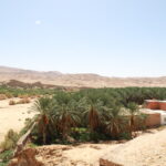 Circuit et Excursion Sahara 2 jours – une nuitée sous tente (privé) : vivez le désert tunisien autrement Nous organisons un circuit Sahara de 2 jours avec une nuit sous tente pensé pour celles et ceux qui veulent goûter, en peu de temps, à l’essentiel du désert tunisien : dunes dorées, ciel constellé, thé au feu de bois, hospitalité du Sud et logistique 100% prise en charge. Départs possibles de Tunis, Hammamet, Sousse, Monastir, Sfax, Djerba, Gabès, Bizerte, Kélibia et Korba — avec transferts fluides, timing optimisé et itinéraire calibré pour un maximum d’émotions en 36 à 48 heures. Pour prolonger l’inspiration et explorer d’autres formats, jetez un œil à nos circuits dans le désert . Un condensé d’aventure saharienne en format court (2J/1N) Pourquoi 2 jours ? Parce que tout le monde n’a pas une semaine à consacrer au Sahara. Ce format court, privé et flexible condense le meilleur : les pistes en 4×4, la marche douce sur les crêtes, la balade à dos de dromadaire si vous le souhaitez, le bivouac sous les étoiles, et ce silence si particulier au cœur des dunes. En deux jours, on déconnecte vraiment : plus d’horloge, plus de notifications… juste la lumière, le sable et l’immensité. Ce que nous aimons mettre au centre : L’authenticité (rencontres simples, cuisine locale, feu de camp) La sécurité (équipe expérimentée, matériel adapté, rythme maîtrisé) La personnalisation (itinéraire ajustable, pauses photo, options famille) Vous voyagez en couple, en famille ou entre amis ? Nous adaptons les distances, le tempo, les menus, et proposons des variantes “tout confort” ou un brin plus “roots”, selon votre style. Itinéraire type – 2 jours / 1 nuit sous tente (100% personnalisable) Note : cet itinéraire est un exemple cohérent pour une première immersion. Selon votre ville de départ, la saison et vos envies (plus de marche, plus de photo, plus de dromadaires, etc.), nous le modulons. Jour 1 – Cap sur les dunes : oasis, pistes et coucher de soleil Prise en charge tôt le matin à Tunis, Hammamet, Sousse, Monastir, Sfax, Djerba, Gabès, Bizerte, Kélibia ou Korba (point de rendez-vous convenu à la réservation). Si vous arrivez par avion, notre navette aéroport vous dépose directement auprès de l’équipe logistique. Route en 4×4 vers l’entrée du désert : brief sécurité, hydratation, check matériel (foulard, couvre-chef, lunettes, crème). Oasis et ksar : arrêt photo/visite selon le secteur (palmeraie, source, village troglodyte). Pause déjeuner dans une auberge locale ou repas pique-nique (selon votre choix à la réservation). Piste vers le campement : arrivée avant le coucher du soleil pour s’installer, souffler et savourer la lumière qui rase les dunes. Marche douce sur les crêtes + initiation thé à la menthe au feu de bois. Dîner traditionnel (couscous, tajine berbère, pain de sable, dattes locales). Veillée (contes, étoiles, photographie nocturne pour les passionnés). Nuit sous tente (bivouac confortable : matelas, couvertures, sanitaires selon le campement). Jour 2 – Aube sur l’erg, dromadaire et retour en douceur Réveil avant l’aube pour un lever de soleil inoubliable au sommet d’une dune (10–20 min de marche à rythme tranquille). Petit déjeuner au camp : café/thé, galettes chaudes, confitures, fruits secs. Balade à dos de dromadaire (optionnelle) ou marche pour prolonger la sensation de Sahara. Derniers clichés et descente vers la piste. Déjeuner en route (auberge typique ou pique-nique raffiné). Retour vers votre point de départ ou continuation vers une extension randonnée (voir plus bas). Arrivée en fin d’après-midi/début de soirée selon la distance. Vous préférez inverser le sens, dormir en dôme transparent, ajouter un atelier cuisine ou une parenthèse bien-être ? Nous ajustons. Découvrez aussi nos inspirations longue durée sur la page Circuits Désert Tunisie . Ce qui est inclus (et ce qui ne l’est pas) – transparence totale Inclus de base Transport privé en 4×4 depuis la zone de départ convenue Encadrement par guide/chauffeur local francophone Bivouac : tente, literie, dîners et petit-déjeuner sahariens Eau en journée (quantités adaptées à la saison) Assistance et sécurité (trousse, balises selon secteurs) Optionnel/à la carte Balade dromadaire (durée modulable) Photographie nocturne (conseils et spots, selon météo) Hébergement de charme à l’aller ou au retour Spécial famille : horaires adoucis, menus enfants, mini-randos Non inclus Dépenses personnelles, pourboires, assurances voyage individuelles Éventuels repas en route hors forfait si vous choisissez la formule libre Bon à savoir : nous aimons travailler à la carte. Dites-nous votre budget, votre rythme, vos priorités (photo, marche, gastronomie, repos) : nous construisons le 2J/1N qui vous convient, sans mauvaise surprise. Demandez un devis gratuit et rapide . Dormir sous tente dans le Sahara : confort, cuisine, étoiles Passer la nuit dans le désert, c’est d’abord retrouver la simplicité : un ciel immense, l’air sec, la chaleur du feu, le goût de la galette encore tiède. Nos camps combinent authenticité et confort : literie propre et épaisse, couvertures adaptées à la saison, coin sanitaire selon le site, équipe discrète mais attentive. La table saharienne : couscous lentement gonflé, tajine berbère, légumes confits, olives, dattes, miel, pain cuit sous le sable… Nous privilégions des produits locaux et cuissons traditionnelles. Régimes végétarien, vegan, sans gluten ? C’est possible — dites-le lors de la demande. La nuit est un monde : selon la saison, on dîne à la belle étoile, on écoute les histoires du guide, on apprend à lire les constellations. Ceux qui aiment la photo s’émerveillent des poses longues sur fond de Voie lactée. Et au matin, la lumière rose qui glisse sur l’erg vous accompagne jusqu’au petit-déjeuner. Quand partir, quoi emporter, comment s’habiller Saisons Automne–printemps : idéal pour un 2J/1N (journées douces, nuits fraîches). Hiver : lumière superbe, nuits plus froides → prévoir couches chaudes. Été : faisable avec départs très matinaux, sieste ombragée et veillées tardives. À mettre dans le sac Chaussures fermées confortables (rando légère ou baskets stables) Chapeau/casquette, lunettes UV, crème solaire Foulard ou cheche (cou, nuque, visage) Veste coupe-vent/chaude pour le soir selon saison Lampe frontale, batterie externe Petite trousse personnelle (médicaments, pansements) Appareil photo / smartphone + protection sable Code vestimentaire : privilégiez manches longues légères (soleil), pantalons fluides, couleurs claires. Le désert aime la simplicité. Départs, transferts et villes desservies Notre logistique couvre les grands axes : Tunis, Hammamet, Sousse, Monastir, Sfax, Djerba, Gabès, Bizerte, Kélibia, Korba. Selon votre localisation, nous combinons voiture/4×4 et, si nécessaire, un vol interne. Vous arrivez en avion ? Gagnez du temps grâce à notre service de navette aéroport (accueil, transfert, coordination avec l’équipe terrain). Astuce : si vous souhaitez optimiser le temps dans les dunes, envisagez une nuit pré-désert en maison d’hôtes ; le lendemain, vous basculez plein Sahara au meilleur horaire. Extensions et variantes pour enrichir votre 2J/1N Deux jours, c’est court… et c’est souvent un déclencheur. Beaucoup souhaitent prolonger : 1 jour de plus pour atteindre un erg plus lointain ou un ksar emblématique Parenthèse montagne (oasis, gorges, belvédères) : voir notre page Randonnée montagne Sahara Journée thématique (photo, artisanat, cuisine, histoire) Excursions en Tunisie variées (îles, médinas, sites antiques) : idées sur Excursion en Tunisie Pour rêver et préparer, piochez dans notre blog d’excursions Style de voyage : couple, famille, amis, solo Couple : ambiance intimiste, dîner privé, spot “coucher de soleil” rien que pour vous. Famille : temps de route fractionné, mini-rando, menus enfants, chameaux “wow effect”. Amis : bivouac convivial, parcours photo, challenge crêtes, humour autour du feu. Solo : bulle de silence, marche consciente, lever de soleil “juste pour soi”. Nous construisons le format 2J/1N qui épouse vos envies plutôt que l’inverse. Sécurité, responsabilité et empreinte légère La sécurité n’est jamais négociable. Nos équipes surveillent la météo, connaissent les pistes, et respectent des protocoles clairs (briefs, hydratation, rythme, orientation). Nous limitons l’empreinte : pas de déchets abandonnés, feux maîtrisés, respect des habitats fragiles et des communautés locales. Envie d’aller plus loin ? Prolongez vers des zones moins fréquentées avec un guide spécialisé, ou optez pour un campement semi-nomade (montage léger, itinérant) : c’est un autre rapport au désert, plus pur et lent. Avis voyageurs et réputation Nous croyons aux preuves : consultez les retours authentiques de nos voyageurs. Ils parlent de soin, de présence, de timing intelligent, de repas savoureux et d’instants suspendus au sommet des dunes. 👉 Vos retours comptent : partagez votre expérience ou découvrez celles des autres sur TripAdvisor – Sud Tunisie . FAQ express – 2 jours / 1 nuit sous tente Faut-il être sportif(ve) ? Non. Nous adaptons la marche (de 10 à 40 min par tronçon, sur sable). Les balades dromadaire sont optionnelles. Et s’il fait froid la nuit ? Nous prévoyons couvertures, conseils vestimentaires et (selon camp) chauffage doux. En hiver : couches chaudes recommandées. Sanitaires ? Selon les sites : solutions simples mais propres. Sur demande : campements avec confort renforcé. Et si je suis végétarien / sans gluten ? Nous ajustons menus et préparation. Il suffit de le mentionner. Assurances ? Nous assurons la sécurité opérationnelle. Pensez à votre assurance voyage personnelle (santé/rapatriement) comme pour toute aventure. Comment réserver votre 2J/1N – simple et rapide Dites-nous d’où vous partez : Tunis, Hammamet, Sousse, Monastir, Sfax, Djerba, Gabès, Bizerte, Kélibia, Korba. Choisissez la date (on optimise selon saisons et agenda). Définissez l’ambiance : contemplation, photo, marche, famille, gastronomie… Recevez votre itinéraire chiffré et ajustez si besoin. Validez et préparez votre sac ! 🎯 Obtenez votre proposition personnalisée ici : devis gratuit – Sahara 2J/1N . Explorez d’autres inspirations sur notre page Circuits Désert et, si l’appel des crêtes vous titille, glissez vers la Randonnée Montagne Sahara . Pourquoi ce format court fonctionne si bien Parce qu’il va à l’essentiel : un départ aux aurores, une arrivée pile au bon moment pour apprivoiser l’erg, une nuit qui change tout, puis un retour le cœur rempli — sans poser quatre jours de congés. C’est une porte d’entrée vers le désert pour celles et ceux qui hésitaient encore. Et pour beaucoup, c’est… le début d’une histoire : on revient plus longtemps, on tente la randonnée itinérante, on explore des oasis de montagne. Pour des inspirations complémentaires, voyez nos Excursions en Tunisie et notre blog d’excursions . Résumé opérationnel – 2J/1N sous tente, privé Départs : Tunis, Hammamet, Sousse, Monastir, Sfax, Djerba, Gabès, Bizerte, Kélibia, Korba Transferts : privés 4×4, navette aéroport à la demande Points forts : coucher + lever de soleil sur l’erg, marche douce, feu de camp, nuit étoilée Style : authentique, sûr, flexible (familles bienvenues) Prochain pas : Demander un devis maintenant Vous avez maintenant les clés pour vivre le désert en 2 jours — sans renoncer à l’essentiel. Nous nous chargeons du reste.