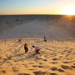 Le Sud tunisien nous appelle par ses dunes blondes, ses oasis suspendues, ses ksour ancestraux et ses villages troglodytiques qui racontent des siècles d’ingéniosité. Nous concevons des circuits désert et des excursions au jour le jour, taillés pour ceux qui veulent goûter l’essentiel du Sahara sans renoncer au confort ni aux rencontres authentiques. Avec nous, votre aventure démarre depuis l’adresse de votre choix en Tunisie (hôtel, aéroport, domicile, gare), et se façonne sur mesure : 2 jours/1 nuit, 3, 5, 7 ou 8 jours… ou plus, si vous voulez prolonger le plaisir. Circuits désert en Tunisie : nos itinéraires phares à personnaliser Avant tout, explorez notre sélection complète de programmes sur Circuits Désert Sahara . Vous y trouverez des canevas testés sur le terrain, prêts à affiner, à adapter, à étendre ou à développer selon votre rythme et vos envies. 2 jours / 1 nuit – Immersion express Douz – Ksar Ghilane (bivouac au choix) Jour 1 : Accueil à Douz, la “porte du désert”. Cap en 4×4 sur les dunes de l’Erg oriental. Pause thé, marche légère sur les crêtes au coucher du soleil, installation du bivouac nomade ou du camp confort. Jour 2 : Piste vers Ksar Ghilane, baignade possible dans la source chaude, sieste à l’ombre des tamaris, déjeuner à la campement puis retour. Pour qui ? Voyageurs pressés qui veulent le goût du Sahara et une nuit sous les étoiles, sans logistique lourde. 4 jours / 3 nuits – Chott el-Jérid, Ong Jmel, oasis de montagne et troglodytes Jour 1 : Tozeur – vieille ville en briques, palmeraie en calèche ou à vélo. Jour 2 : Ong Jmel et ses dunes cinématographiques, traversée du Chott el-Jérid (arrêts photo sur les mirages), nuit à Douz. Jour 3 : Bivouac dans l’Erg : dîner sous la Voie lactée, pain cuit sous le sable. Jour 4 : Chebika – Tamerza – Mides, sentiers au fil de l’eau, canyons et panoramas, retour à Tozeur. Pour qui ? Ceux qui veulent désert + salin + oasis en un compact équilibré. 7–8 jours – La grande traversée : Douz, Ksar Ghilane, Tataouine, ksour & Matmata Jours 1–2 : Tozeur, Chott el-Jérid, Douz et mise en jambe saharienne. Jour 3 : Nuit en plein désert, silence minéral, ciel constellé. Jour 4 : Ksar Ghilane : baignade, fort romain, dunes souples. Jour 5 : Cap sur Tataouine et les ksour, coucher de soleil à Chenini. Jour 6 : Ksar Ouled Soltane, greniers superposés, balade artisanale. Jour 7 : Matmata et l’architecture troglodytique. Jour 8 : Transfert flexible (Tozeur, Djerba, Tunis) selon vos vols. Pour qui ? Les voyageurs qui veulent prendre le temps, multiplier les ambiances et rencontrer les gens. Tous ces itinéraires servent de base modulable : nous ajustons les distances, le niveau de confort, le nombre de nuits en bivouac, et même les parenthèses thématiques (photo, gastronomie, géologie, traditions). Découvrez, comparez, et revenez vers nous avec vos priorités pour que nous mettions tout cela à développer ensemble sur cette page . Excursions au Sud tunisien : une journée, un concentré d’émerveillement Vous avez peu de temps ? Une excursion bien pensée suffit pour capter l’essence du Sud. Composez votre panier d’incontournables sur Excursion en Tunisie et puisez des idées fraîches sur notre blog d’excursions . Oasis de montagne : Chebika – Tamerza – Mides Entre sources claires, palmeraies accrochées et canyons striés, ce trio régale l’œil et l’objectif. Marche facile, baignade de cheville, pause citronnade. Départ idéal depuis Tozeur. Ong Jmel & décors du désert À quelques dunes de Tozeur, on s’amuse en 4×4, on grimpe pour le panorama, on capture le sable qui ondule. Demi-journée ludique et photogénique. Troglodytes de Matmata & village perché de Tamezret Au départ de Djerba ou Gabès, on plonge dans la vie souterraine des maisons creusées. Rencontre avec les habitants, découverte du pain tabouna et de l’huile d’olive locale. Douz, dromadaires & coucher de soleil Quand le temps manque, l’or du soir autour de Douz suffit pour graver la mémoire : balade chamelière, dîner traditionnel… et ce silence qui impressionne toujours la première fois. Randonnée & trekking : crêtes, ergs et nuits étoilées Pour ceux qui aiment avancer à pied et compter le temps autrement, nous dessinons des boucles sur mesure, de la balade familiale au trek soutenu, mêlant crêtes rocheuses, oueds, plateaux tabulaires et dunes. Consultez nos inspirations et niveaux conseillés sur Randonnée Montagne & Sahara (et gardez le lien, nous y ajoutons régulièrement des variantes : randonnée montagne & Sahara ). Exemple de journée rando “signature” Aube : lumière dorée sur l’erg, départ frais. Matin : arêtes panoramiques, lecture du paysage (vent, strates, végétation). Midi : pique-nique à l’ombre d’un tamaris, sieste courte. Après-midi : descente douce vers l’oued, pas dans le sable, souffle régulier. Soir : campement, ciel profond, contes nomades et pain sous la cendre. Prise en charge partout en Tunisie : navettes et transferts fluides Nous venons vous chercher là où vous êtes : à Tunis, Hammamet, Sousse, Monastir, Sfax, Djerba, Tozeur, Gabès… ou devant votre porte si vous résidez en Tunisie. Gagnez un temps précieux avec notre service de navette aéroport : voiture ou minibus récents, chauffeurs expérimentés, coordination directe avec vos vols, arrivée sans stress au point de départ du circuit. Logistique & confort : hébergements, bivouacs, sécurité Dormir dans le désert… à votre façon Bivouac nomade : tentes sahariennes, feu de camp, magie brute du ciel nocturne. Camp confort : lits, sanitaires, douches chaudes, électricité le soir. Maisons d’hôtes & hôtels : charme, proximité des sites, accueil familial. Manger bon, local et adapté Nos repas respectent vos régimes (végétarien, sans gluten, allergies – à nous signaler). Au menu : couscous, méchoui, chakchouka, ojja, salades de saison, dattes Deglet Nour. Sécurité & sérénité Avant chaque départ, briefing sur l’étape, hydratation, météo et rythme. Sur certaines boucles isolées : téléphone satellite, radio et points d’eau balisés. Notre règle d’or : l’expérience avant la performance. Circuits personnalisés 100 % sur mesure : 2j/1n… ou plus Votre planning n’est pas standard ? Parfait : nous adorons adapter. Week-end d’évasion : 2 jours/1 nuit avec coucher de soleil sur l’erg et bivouac. Mini-croisière saharienne : 3–4 jours, dunes + oasis de montagne. Grande traversée : 7–10 jours, ajout des ksour, troglodytes et plages de Djerba en fin de parcours. Thèmes : photo, géologie, artisanat, cuisine, bien-être, itinérance douce avec dromadaires de bât. Point de départ flexible : depuis l’adresse que vous voulez en Tunisie, nous organisons le ramassage, la logistique 4×4, et le calendrier d’étapes qui colle à vos vols. Conseils pratiques : quoi emporter, quand venir, comment s’habiller Saison : d’octobre à avril, le désert est idéal (doux le jour, frais la nuit). En mai/sep., départs tôt et fins d’après-midi privilégiés. L’été, programmes courts et campements climatisés. Sac : préférez un sac souple, plus simple dans les 4×4 et au camp. Indispensables : chèche/casquette, lunettes UV, crème solaire, gourde, coupe-vent léger, lampe frontale, chaussures fermées confortables. Photo : batteries de rechange, housse anti-sable, chiffon microfibre. Respect : on laisse zéro trace ; on photographie les personnes avec leur accord. Réserver simplement : devis gratuit, réponses rapides, ajustements illimités Dites-nous : vos dates, votre ville de départ en Tunisie, votre niveau de confort (bivouac rustique ou camp confort), vos envies (marche, culture, couchers de soleil, observation des étoiles, photographie). Nous revenons vers vous avec une proposition claire, modulable à l’infini jusqu’à ce qu’elle vous ressemble. Lancez votre projet ici : devis voyage désert – gratuit . Explorez nos circuits désert pour préciser vos préférences. Inspirez-vous côté excursions en Tunisie et côté blog excursions pour les idées du moment. Les marcheurs ? Cap sur randonnée montagne & Sahara pour choisir votre niveau. Ce que nos voyageurs apprécient le plus La liberté : départ depuis l’adresse de votre choix et rythme à votre mesure. La variété : en quelques jours, on passe du salar rose aux gorges verdoyantes et à la mer de sable. Le confort : hébergements choisis, véhicules récents, navettes aéroport sans couture. L’humain : artisans, familles troglodytes, gardiens de ksour, palmiculteurs… Des échanges simples, respectueux et mémorables. La transparence : un devis clair, des options posées, pas de surprises. Après votre retour, votre parole compte : laissez votre avis et partagez vos plus belles images sur notre page TripAdvisor . Vos retours inspirent les prochains voyageurs et nous poussent à faire toujours mieux. Idées d’itinéraires “à développer” ensemble Escapade 2j/1n – Départ depuis votre adresse en Tunisie Jour 1 : prise en charge à Tunis/Sousse/Monastir/Sfax/Djerba/Tozeur (ou autre), arrivée Douz, dunes au crépuscule, dîner sous les étoiles, bivouac. Jour 2 : Ksar Ghilane, source chaude, déjeuner traditionnel, retour – ou extension d’une nuit supplémentaire selon l’humeur. Signature 5j – Désert, salin & oasis Tozeur (vieille ville, palmeraie), Ong Jmel, Chott el-Jérid, Douz, bivouac, Chebika–Tamerza–Mides, transfert vers votre prochaine étape. Ajouts possibles : Matmata, Chenini, Ksar Ouled Soltane suivant vos envies. Grand tour 8j – Ksour & troglodytes en plus Douz – Ksar Ghilane – Tataouine – Chenini – Ksar Ouled Soltane – Matmata + options rando (voir randonnée montagne & Sahara ) pour pimenter certaines étapes. Pour chaque version, nous adaptons kilométrage, intensité des marches, nombre d’heures en 4×4, et niveaux d’hébergements. Votre sud tunisien doit être unique. Prêt pour l’aventure ? On s’occupe du reste Qu’il s’agisse d’une parenthèse de deux jours ou d’un périple d’une semaine, nous orchestrons transferts, hébergements, bivouacs, repas, autorisations et tous ces petits détails invisibles qui rendent un voyage fluide. Vous, vous profitez : lumières changeantes, silence habité, rencontres et cuisine du soleil. Démarrez maintenant avec un devis gratuit , puis continuez l’exploration sur circuits désert . Si vous arrivez par avion, pensez au service de navette aéroport . Et pour piocher des idées fraîches, passez par excursions en Tunisie et notre blog d’excursions . Rendez-vous dans le désert. Le soleil se couche, la dune rougit : votre histoire commence.