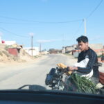 Le Sahara ne se raconte pas, il se vit. Nous concevons des circuits et excursions sur-mesure avec nuitée sous tente pour vous faire goûter au silence des dunes, aux ciels constellés et à l’hospitalité saharienne. Au départ de Tunis, Hammamet, Sousse, Monastir, Sfax, Djerba, Gabes, Bizerte (Bizert), Kélibia et Korba, nous organisons toute la logistique : transferts, 4x4, guides locaux, campements confortables et repas authentiques. Vous choisissez le rythme ; nous orchestrons l’expérience. Pourquoi choisir un circuit désert avec nuitée sous tente dans le Sud Tunisien ? Parce que le désert est un monde à part. Une nuit en bivouac au cœur des dunes, c’est la promesse d’un coucher de soleil flamboyant, d’un dîner cuisiné au feu de bois, d’un thé à la menthe partagé autour des braises et d’un réveil face à une mer de sable. Nos circuits désert privilégient des parcours immersifs et des distances intelligentes pour maximiser le temps passé dans le Sahara : Douz, Ksar Ghilane, Tembaine, Ong Jmel, Chott El Jerid, sans oublier les oasis de montagne Tamerza, Chebika, Midès et les villages troglodytes de Matmata. Départs garantis depuis les principales villes de Tunisie Nous proposons des prises en charge souples, adaptées aux voyages individuels, en couple, en famille ou en petit groupe. Départs possibles de : Tunis, Hammamet, Sousse, Monastir, Sfax, Djerba, Gabes, Bizerte (Bizert), Kélibia et Korba. Arrivée par avion ? Notre navette aéroport assure vos transferts (Tunis-Carthage, Enfidha, Monastir, Sfax, Djerba, Tozeur) jusqu’au point de départ du circuit. Itinéraires types — 2, 3 ou 4 jours d’évasion saharienne Chaque programme s’adapte à votre temps et à votre niveau de confort. Voici des exemples qui fonctionnent très bien ; nous les personnalisons selon vos envies. 2 jours / 1 nuit — Douz & nuit sous tente à Ksar Ghilane Jour 1 : Prise en charge (selon votre ville de départ) → Douz, la « porte du Sahara ». Déjeuner puis 4x4 en piste vers Ksar Ghilane. Installation au bivouac au pied des dunes. Coucher de soleil, balade en dromadaire (option), dîner berbère, veillée sous les étoiles. Jour 2 : Petit-déjeuner. Bain possible dans la source tiède de l’oasis. Piste vers Chenini des sables ou cap sur Matmata pour découvrir l’architecture troglodyte. Déjeuner terroir, retour vers votre ville. Points forts : immersion rapide, dunes accessibles, source thermale, idéal famille. 3 jours / 2 nuits — Tozeur, Chott El Jerid & dunes de Tembaine Jour 1 : Tozeur, palmeraie et vieux quartier d’El Ouled Hadef. 4x4 vers Chebika (cascade), Tamerza (canyon), Midès (gorges). Retour à Tozeur, nuit en maison d’hôtes. Jour 2 : Traversée du Chott El Jerid (miroir de sel), Douz, piste vers Tembaine. Installation au campement dans un océan de dunes. Balade au soleil couchant, dîner au feu de bois, ciel profond, silence absolu. Jour 3 : Réveil doux, petit-déjeuner, retour par des pistes sahariennes ; halte artisanat, déjeuner à Douz, puis transfert retour. Points forts : variété des paysages (montagnes, chott, dunes), deux ambiances de nuit, beau rythme. 4 jours / 3 nuits — Grand Sahara & ksour berbères Jour 1 : Départ littoral (Hammamet/Sousse/Monastir/Sfax) → Matmata (maisons troglodytes) → Douz. Nuit à Douz. Jour 2 : 4x4 piste Jebil National Park vers Tembaine. Bivouac, randonnées sur crêtes, coucher de soleil panoramique, soirée nomade. Jour 3 : Cap Ksar Ghilane par la piste. Baignade, fort romain en option, quad possible. Route scénique vers Chenini (ksar accroché à la montagne). Nuit en gîte de charme. Jour 4 : Découverte des ksour (Douiret, Guermessa) et retour progressif vers votre ville. Points forts : condensé de Sahara profond + culture berbère, variété d’hébergements, souvenirs mémorables. Vous souhaitez accentuer la marche ? Explorez nos programmes Randonnée Montagne Sahara , conçus pour profiter des points hauts au lever/au coucher du soleil. Une nuit sous tente : confort, authenticité et ciel étoilé Nos campements sahariens allient confort et simplicité : tentes équipées de literies douillettes, sanitaires partagés ou privatifs selon la gamme, dîner complet (salades, couscous, grillades, pain cuit sous le sable), musiques du désert. Sur demande : options glamping (tente saharienne premium, électricité, salle d’eau privative), privatisation pour couples/mini-groupes, dîner romantique dressé sur la dune. Et, loin des lumières, la Voie lactée déroule son ruban — c’est le moment photo. Activités phares : dromadaire, 4x4, quad, rando et spots de cinéma Balade à dos de dromadaire : 30 à 90 minutes, lumière parfaite au coucher du soleil. Raid 4x4 : franchissement doux des cordons de dunes, découverte des pistes mythiques. Quad/buggy (en option, zones dédiées). Rando saharienne : crêtes, ergs et regs ; consultez nos idées randonnée dans le Sahara . Ong Jmel & décor Star Wars près de Nefta, Chott El Jerid et ses mirages, Ksar Ghilane et son fort romain. Pour des inspirations courtes et thématiques, parcourez nos excursions en Tunisie et notre blog des excursions , mis à jour avec itinéraires, conseils et nouveautés. Logistique maîtrisée : transferts, hébergements, repas et sécurité Nous pilotons l’ensemble : transferts (voir notre service navette aéroport ), véhicules 4x4 récents, guides-chauffeurs expérimentés, hébergements validés, bivouacs conformes et restauration de qualité. Briefing sécurité, trousse de premiers soins, communication radio sur certaines pistes, horaires adaptés aux saisons. En famille ? Nous aménageons le programme (durées de route, pauses, menus), prêtons des sièges enfants et recommandons les meilleures configurations de tentes. Quand partir ? Climat & meilleures saisons Octobre → avril : saison idéale pour le désert (journées douces, nuits fraîches, ciel limpide). Mai & septembre : possible avec départs matinaux et siestes à l’ombre. Juin → août : circuits sur mesure avec temps de route réduits, activités au lever/coucher du soleil, version « oasis & montagne ». Nous ajustons toujours le timing pour que coucher et lever de soleil coïncident avec vos plus beaux spots de photo. Combien ça coûte ? Formules et devis personnalisé Les prix varient selon la durée, la saison, le type d’hébergement (standard, charme, glamping), les activités optionnelles (quad, balade dromadaire longue, guide culturel dédié) et le niveau de privatisation. Pour une proposition précise et transparente, demandez votre devis gratuit : nous répondons avec un itinéraire détaillé (kilométrage, temps de route, points d’intérêt, inclusions/exclusions). Ce qui est généralement inclus Transferts aller/retour depuis votre ville de départ (ou navette aéroport ). 4x4 ou minibus + 4x4 selon la taille du groupe. Guide-chauffeur francophone, assistance logistique. Hébergements (maisons d’hôtes, gîtes, campement saharien). Pension complète en désert (dîner & petit-déjeuner au bivouac). Eau minérale pendant les trajets. Droits de piste/sites mentionnés dans le programme. Assistance 24/7. En option : quad/buggy, dromadaire long, tentes premium, photographe, gâteau d’anniversaire, dîner privé sur la dune, veillée musicale. Nos engagements : qualité, respect des lieux et retours clients Nous collaborons avec des partenaires locaux sélectionnés, limitons la taille des groupes sur les zones sensibles, appliquons une politique zéro trace au bivouac et valorisons les savoirs-faire des communautés (artisanat, cuisine, musique). Rien ne parle mieux que l’expérience de nos voyageurs : consultez nos avis clients sur TripAdvisor pour vous faire une idée concrète de l’accompagnement et de l’organisation. Exemples de journées “signature” « Dunes & Douceur » : départ à l’aube, traversée du chott, déjeuner sous khaïma, boucle 4x4 dans l’erg, balade dromadaire au coucher du soleil, dîner traditionnel, étoile filante au dessert. « Oasis & Canyons » : escale à Chebika (cascade), belvédère de Tamerza, gorges de Midès, palmeraies de Tozeur, visite d’un atelier de briques ocre, coucher sur Ong Jmel. « Ksour & Mémoire » : villages berbères (Chenini, Douiret), greniers de montagne, cuisine de terroir, coucher de soleil sur les crêtes, conte au coin du feu. Envie d’un focus rando ? Allez voir nos idées randonnée Montagne Sahara , parfaites pour marcher léger et profiter des panoramas. Conseils pratiques & check-list rapide Vêtements : couches légères la journée, polaire/coupe-vent pour le soir (nuit fraîche d’octobre à avril). Chaussures : baskets ou légères de rando (sable), sandales fermées selon activités. Accessoires : chèche/casquette, lunettes UV, crème solaire, stick lèvres, gel hydroalcoolique, frontale (bivouac). Photo : batteries chargées, sac étanche (chott & sable), chiffon microfibre. Santé : trousse perso (médecins/pharmacies à Tozeur, Douz, Tataouine), eau fournie en trajet. Esprit : ralentir, observer, respirer — le Sahara récompense ceux qui prennent leur temps. Réserver en 3 étapes : simple et clair Choisir votre inspiration : parcourez nos circuits désert et excursions ; piochez des idées sur le blog . Recevoir une proposition : dites-nous vos dates, ville de départ (Tunis, Hammamet, Sousse, Monastir, Sfax, Djerba, Gabes, Bizerte/Bizert, Kélibia, Korba), préférences (confort, rythme, activités). Nous envoyons un itinéraire + budget. Confirmer : validation et acompte sécurisé. Le jour J, notre navette aéroport ou notre équipe passe vous chercher. Besoin d’un conseil rapide ? Remplissez le devis gratuit / contact . FAQ — Vos questions les plus fréquentes Combien d’heures de route par jour ? Nous visons 3–5 h/jour selon la durée totale. Les pistes 4x4 sont fractionnées par des pauses et des points de vue. Peut-on voyager avec des enfants ? Oui. Nous adaptons les étapes, prévoyons des pauses régulières, recommandons des dunes accessibles, et réservons des tentes familiales. Quid de la météo en hiver ? Douce le jour, fraîche la nuit : prévoir une couche chaude. Le ciel d’hiver donne des couchers de soleil superbes et une voie lactée très nette. Les repas au bivouac ? Cuisine locale et généreuse : salades, couscous, grillades, pain de sable, fruits, thé. Allergies/régimes : signalez-les à l’avance. Faut-il une grande condition physique ? Non. La plupart des circuits sont accessibles. Les randonnées sont modulables. Pour les programmes sportifs, voyez nos pages randonnée dans le Sahara . Peut-on personnaliser de A à Z ? Absolument. C’est notre spécialité : itinéraires thématiques (photo, astro, bien-être, archéo), privatisation, glamping, soirée privée sur la dune. Idées de combinaisons gagnantes Désert + Oasis de montagne : Tozeur, Chebika, Tamerza + bivouac Tembaine. Désert + Ksour berbères : Chenini, Douiret + Ksar Ghilane. Désert + Côte : départ Hammamet/Sousse/Monastir/Sfax → 2 nuits au Sahara → retour littoral. Désert express depuis Djerba/Gabes : perfect pour un week-end prolongé. Pour bâtir la vôtre, inspirez-vous de nos circuits désert et de nos excursions , puis demandez un devis gratuit . Éthique & empreinte positive Nous soutenons une économie respectueuse : rémunération équitable des guides, restauration locale, volumes raisonnés, tri des déchets au campement, sensibilisation au laisser-aucune-trace. Nous évitons les zones saturées et privilégions les parcours alternatifs pour préserver la magie des lieux — et votre tranquillité. Prêt·e pour votre nuit sous les étoiles ? Le Sahara n’attend que vous. Dites-nous d’où vous partez (Tunis, Hammamet, Sousse, Monastir, Sfax, Djerba, Gabes, Bizerte/Bizert, Kélibia, Korba), vos dates et vos envies ; nous transformons ce souhait en itinéraire clair, fluide et mémorable. → Commencez ici : Circuits désert sur mesure → Besoin d’un transfert ? Navette aéroport → Questions, budget, disponibilité ? Devis gratuit / contact → Curieux d’en savoir plus ? Blog des excursions en Tunisie → Envie d’idées courtes ? Excursions en Tunisie → Voir ce qu’en disent nos voyageurs : Avis TripAdvisor