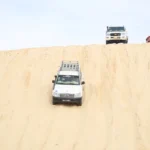 Célébrer la fin d’année dans le désert, sous un ciel constellé d’étoiles, autour d’un feu de camp, c’est plus qu’un voyage : c’est une parenthèse enchantée. Nous organisons des circuits Sud Tunisie et des excursions Sahara Tunisie en format privé, au départ de Tozeur, Douz, Djerba, Gabès ou Tunis, avec des itinéraires sur mesure, un guide francophone dédié et une logistique fluide de bout en bout. Que vous voyagiez en couple, en famille avec enfants, entre amis ou en petit groupe, nous créons un programme qui vous ressemble : nuits en campement confortable ou en camp « luxe », dîners de Réveillon sous la tente berbère, randonnées et 4×4 au rythme qui vous convient, rencontres authentiques et temps pour vous. Dès votre arrivée, nos navettes aéroport vous accueillent et vous déposent directement à votre hôtel ou dans les dunes selon le programme. Envie d’explorer nos propositions avant d’échanger avec un conseiller ? Parcourez nos circuits désert et nos idées d’excursions en Tunisie . Et pour les amoureux de marche et de panoramas, nous avons conçu des itinéraires randonnée montagne & Sahara , parfaits pour (re)connecter avec la nature au cœur de l’hiver. Pourquoi choisir le Sud tunisien pour la fin d’année ? Le Grand Sud tunisien réunit tout ce qu’on aime pour un Réveillon hors du commun : dunes dorées à perte de vue, oasis de montagne (Chebika, Tamerza, Mides) baignées de lumière, villages troglodytes (Matmata), ksour séculaires (Chenini, Ksar Ouled Soltane, Douiret), sources chaudes (Ksar Ghilane), et une hospitalité chaleureuse. L’hiver est une saison idéale : températures douces la journée, ciel limpide et couchers de soleil spectaculaires. La région est facilement accessible : vols pour Tozeur et Djerba (ou Tunis), routes praticables et transferts rapides en 4×4. Nous attachons aussi beaucoup d’importance au rythme. Loin des foules et des grandes soirées standardisées, un circuit privé permet d’alterner instants forts (randonnées, dromadaire, balades en 4×4, quad/sandboard) et temps calmes (sieste sous la khaïma, pause thé à la menthe, contemplation des étoiles). Pour vous inspirer, explorez nos récits et conseils sur le blog excursions Tunisie . Nos circuits Sahara Tunisie, 100 % privés et sur mesure Chaque voyage est construit autour de vos priorités : durée, niveau de confort, envies d’activités, curiosités culturelles, et bien sûr le souhait d’un Réveillon dans le désert. Vous pouvez partir de 2 à 3 jours pour une immersion express ou vous offrir 5 à 8 jours (et plus) pour un panorama complet Sud & Sahara. Commencez par feuilleter nos circuits désert , puis demandez un devis gratuit et personnalisé : nous ajustons tout, jusqu’aux menus de fête. Ce qui fait la différence : Privatisation totale : véhicule 4×4 dédié, chauffeur/guide francophone, départ garanti à vos dates. Flexibilité : horaires, pauses photos, détours imprévus… on cale le rythme sur le vôtre. Confort adapté : du campement charme au camp « luxe », écolodges, maisons d’hôtes ou hôtels sélectionnés. Cuisine locale : couscous, méchoui, tajines, pain de sable, pâtisseries… menus Réveillon soignés. Accès facile : navettes aéroport incluses à la demande. Exemples d’itinéraires pour Noël & Nouvel An (modèles 100 % modulables) 3 jours express : dunes & Réveillon (depuis Tozeur, Douz ou Djerba) Jour 1 — Oasis & désert Accueil à l’aéroport par notre équipe (service navette ). Route vers Douz ou Tozeur selon votre arrivée. Découverte des palmeraies, promenade en dromadaire (option), premier coucher de soleil sur les dunes. Dîner convivial et nuit en campement. Jour 2 — Dunes blanches & dîner de fête Balade 4×4 vers Tembaine ou Ong Jmel (décors de Star Wars), haltes photos, sandboard pour les volontaires. Installation au camp, douche chaude, apéritif au coin du feu. Dîner de Réveillon (musique traditionnelle possible), ciel étoilé, nuit magique sous la khaïma. Jour 3 — Matin doré & retour Réveil tôt pour le lever du soleil, petit-déjeuner, dernière marche dans les dunes. Transfert retour et fin de circuit. Envie de prolonger ? Poursuivez sur une excursion en Tunisie côté oasis de montagne. 5 jours iconiques : oasis, ksour & sources chaudes Jour 1 : Tozeur — Chebika, Tamerza, Mides (oasis & gorges) — Tozeur. Jour 2 : Tozeur — Ong Jmel — pistes sahariennes — Douz — camp. Jour 3 : Ksar Ghilane — baignade en source chaude — quad au coucher du soleil — camp « luxe ». Jour 4 : Matmata (maisons troglodytes) — Chenini (village perché) — dîner berbère — nuit à Tataouine. Jour 5 : Ksour (Ksar Ouled Soltane…) — retour Djerba ou Tozeur. Ce format marie parfaitement découverte culturelle et immersion saharienne, avec un Réveillon au camp ou en maison d’hôtes selon vos préférences. Les marcheurs pourront intégrer une randonnée montagne & Sahara d’une demi-journée à 2 jours. 7–8 jours Grand Sud : la grande odyssée du Sahara Du Chott El Jerid aux ksour de Tataouine, des canyons de Mides à la douceur de Ksar Ghilane, on vit une grande traversée : dunes, plateaux lunaires, jeeps sur les pistes, repas au feu de bois… Une aventure accessible, pensée pour tous ceux qui veulent prendre le temps et multiplier les moments “waouh”. Moments forts d’un circuit Sud Tunisie Oasis de montagne : cascades, palmeraies verdoyantes, vues plongeantes sur les canyons. Trek & balade : itinéraires randonnée montagne & Sahara , des sentiers faciles aux boucles un peu plus sportives. Dunes et mer de sable : couchers de soleil flamboyants, silence total, ciel pur. Patrimoine berbère : villages troglodytes, ksour granaries, histoire et traditions. Saveurs : couscous au méchoui, dattes de Deglet Nour, pain cuit sous le sable… Activités fun : quad, buggy, sandboard, balade en dromadaire, astronomie au télescope (sur demande). Hébergements & Réveillon dans le désert Nous sélectionnons des campements confortables (lits réels, draps chauds, douches), des écolodges de caractère et des maisons d’hôtes typiques. Le soir du Réveillon, vous dégustez un menu de fête (ex. : soupe chorba parfumée, méchoui ou couscous royal, pâtisseries au miel, dattes farcies), accompagné de musique traditionnelle selon l’ambiance que vous souhaitez. Les familles apprécient la sécurité, l’espace et la convivialité des cafés touaregs ; les couples adorent nos setups privatifs (table dressée dans les dunes, lanternes, voûte étoilée). Navettes aéroport & logistique sans effort Faites simple : nous venons vous chercher. Nos services de navette aéroport opèrent depuis Tozeur, Djerba, Gabès et Tunis. Votre chauffeur/guide suit votre vol, s’adapte aux retards éventuels et vous mène directement sur l’itinéraire. Valises chargées, bouteilles d’eau à bord, sièges enfants si besoin : pas de stress, juste l’excitation de partir au Sahara. Prix & devis gratuit, transparence totale Chaque circuit étant privé et sur mesure, le tarif dépend de la période, du nombre de participants, des hébergements souhaités et des activités choisies (quad, dromadaire, buggy, etc.). Pour obtenir votre proposition détaillée (programme au jour le jour, prestations incluses, options), demandez votre devis gratuit . Nous précisons tout noir sur blanc : transports, guide, repas, nuitées, activités, assurances, taxes… pas de surprise. FAQ — Excursion Sahara Tunisie & Circuit fin d’année Quand partir pour un Réveillon dans le désert ? De mi-décembre à début janvier, c’est parfait : journées lumineuses, nuits fraîches mais sèches. Prévoyez une doudoune légère, bonnet et foulard pour le soir. Est-ce adapté aux enfants ? Oui. Nos circuits privés s’ajustent au rythme familial : siestes, activités courtes, menus adaptés. Le dromadaire et le sandboard font fureur auprès des plus jeunes. Peut-on marcher un peu chaque jour ? Bien sûr. Nous intégrons volontiers des sections “rando facile” et des boucles plus engagées pour les amateurs. Inspirez-vous de nos itinéraires randonnée montagne & Sahara . Quel niveau de confort en campement ? Du camp charme (tente privative, lits, douches chaudes) au camp “luxe” (plus d’espace, literie haut de gamme, restauration soignée). Dites-nous vos attentes, on vous proposera la bonne adresse. Comment se passent les transferts ? Avec nos navettes aéroport : vol surveillé, accueil personnalisé, transfert immédiat. Le véhicule 4×4 privatisé reste à votre disposition pour l’itinéraire. Peut-on lire des avis récents ? Oui, consultez les retours de nos voyageurs sur Tripadvisor – Sud Tunisie . Conseils pratiques pour un voyage fluide Valise : couche technique (t-shirt respirant), polaire, doudoune légère, pantalon confortable, chaussures de marche, coupe-vent, lunettes de soleil, crème solaire, stick lèvres, lampe frontale. Soirées : il peut faire frais la nuit (Sahara sec). Prévoyez bonnet/écharpe pour admirer l’astronomie sans frissonner. Santé : eau en bouteille, lavages de mains réguliers, trousse simple (pansements, antalgiques). Photo/vidéo : batteries chargées, powerbank, sachets étanches pour le sable. Respect : demandez toujours avant de photographier, respectez les sites (oasis, ksour), ramenez vos déchets. Rythme : laissez des temps “off” pour savourer le silence ; c’est là que la magie opère. Pour plus d’idées et de récits inspirants, jetez un œil à notre blog excursions Tunisie . Idées d’excursions à la journée (avant/pendant/après votre circuit) Oasis de montagne : Chebika – Tamerza – Mides, gorges, cascades, points de vue grandioses. Plateaux sahariens : Ong Jmel et le Chott el Jerid, mirages et décor de cinéma. Patrimoine berbère : Matmata, Chenini, Douiret, ksour et greniers collectifs. Aventure : quad ou buggy dans les dunes, sandboard au coucher de soleil. Bien-être : bain en source chaude à Ksar Ghilane, hammam traditionnel. Retrouvez d’autres idées et départs sur notre page Excursion en Tunisie . Notre engagement qualité & avis voyageurs Nous privilégions des partenaires locaux fiables, des hébergements à taille humaine, une sécurité irréprochable et une écoute constante de vos envies. Nos guides connaissent « leurs » dunes et « leurs » pistes sur le bout des doigts ; ils aiment partager anecdotes, traditions et secrets d’oasis. Les avis parlent d’eux-mêmes : parcourez notre page Tripadvisor pour vous faire une idée. Comment réserver votre fête de fin d’année dans le désert (simple et clair) Inspirez-vous de nos circuits désert et de nos randonnées montagne & Sahara . Contactez-nous via le formulaire devis gratuit : vos dates, votre aéroport d’arrivée, votre style d’hébergements, vos envies (Réveillon sous la tente, quad, marche…). Recevez votre programme détaillé (jour par jour), ajustez au besoin, validez. Profitez : nos navettes aéroport s’occupent du reste. Prêts pour un Réveillon inoubliable ? Si l’idée de passer la fête de fin d’année en Tunisie au cœur des dunes du Sahara vous fait vibrer, commençons à dessiner votre voyage. Découvrez nos itinéraires sur Circuits désert , explorez d’autres inspirations Excursion en Tunisie , et demandez votre devis gratuit sur mesure . Pour les marcheurs, n’oubliez pas nos parcours randonnée montagne & Sahara . Et si vous arrivez par les airs, réservez simplement vos navettes aéroport : on s’occupe de tout, vous n’avez plus qu’à profiter. À très vite dans le Sud tunisien, là où le temps s’étire, où la lumière d’hiver caresse les dunes et où la nuit de Réveillon devient un souvenir pour la vie.