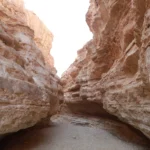 Le désert au cœur de l’hiver, c’est la promesse d’un grand bol d’air, de couchers de soleil flamboyants et d’un réveillon pas comme les autres. Nous créons pour vous un circuit Sud Tunisie totalement privé, rythmé par des excursions dans le Sahara tunisien, des oasis de montagne, des dunes de Douz à Ksar Ghilane, des maisons troglodytes de Matmata aux ksour de Tataouine, sans oublier le mythique Chott el-Jérid et les décors de cinéma près de Tozeur. À chaque étape : chauffeur-guide francophone, 4×4 climatisé, hébergements de caractère et bivouac sous les étoiles pour célébrer la fin d’année dans une atmosphère chaleureuse et authentique. Pourquoi choisir le Sud tunisien pour le réveillon ? Climat doux, paysages mythiques et ambiance 100 % désert Décembre et janvier offrent des journées lumineuses (15–22 °C) et des nuits fraîches idéales pour le bivouac (4–10 °C). Le Sahara en Tunisie déploie ici toute sa palette : miroirs de sel du Chott el-Jérid, dunes blondes, oasis de montagne (Chebika, Tamerza, Mides), villages enracinés dans la pierre, sources chaudes, pistes secrètes où le 4×4 se faufile en douceur. On vient pour déconnecter, respirer, randonner, chevaucher un dromadaire au coucher du soleil, goûter à une cuisine du terroir et vivre un réveillon dans le désert aux mille étoiles. Pour explorer des idées d’itinéraires, feuilletez nos propositions de circuits désert Tunisie : Circuits Désert – sudtunisie.com . Nos circuits Sahara privés : 3, 5 ou 8 jours – Itinéraires modulables selon votre rythme Nous concevons des voyages sur mesure qui collent à vos dates, votre budget et vos envies. Trois formats plébiscités : 3 jours express – L’essentiel du Sahara en un clin d’œil Jour 1 — Tozeur ▸ Chott el-Jérid ▸ Douz : accueil à l’aéroport, traversée des étendues salines (arrêts photo sur les teintes roses et les reflets), déjeuner à Douz, balade à dos de dromadaire au sunset, dîner aux lampions, nuit en camp. Jour 2 — Douz ▸ Ksar Ghilane : piste douce vers l’erg, bain en source chaude, option quad/buggy (selon envie), pause thé à la menthe, soirée conviviale, ciel profond et constellations. Jour 3 — Matmata ▸ Tozeur/Djerba : maisons troglodytes, haltes panoramiques, artisanat, transfert retour. 5 jours signature – L’équilibre parfait entre dunes, oasis et patrimoine Jour 1 — Oasis de montagne : Chebika, Tamerza, Mides ; sentiers accessibles, cascades, vues spectaculaires ; coucher de soleil sur Ong Jmel. Jour 2 — Chott el-Jérid & Douz : safari photo, initiation aux pistes sahariennes, dîner d’épices et dattes. Jour 3 — Douz ▸ Ksar Ghilane : méharée, source chaude, dunes orangées, veillée au camp. Jour 4 — Tataouine & les ksour : Chenini, Ksar Ouled Soltane, Ksar Hadada ; greniers fortifiés, légendes, déjeuner terroir. Jour 5 — Matmata ▸ Tozeur/Djerba : géologie lunaire, ateliers poterie, retour. 8 jours immersion – Grand Sahara, grand art de vivre Vous prenez le temps : deux nuits en camp, randonnées additionnelles, ateliers de cuisine, visites élargies de villages, observations du ciel et pauses photo au fil des ergs. Idées à picorer et combiner ici : Circuits Désert . Expériences phares : dromadaire, quad, randonnées, bivouac, gastronomie locale Méharée & quad : l’allure dorée du dromadaire au sunset, le frisson du quad ou du buggy sur des boucles sûres et encadrées. Randonnées adaptées : canyons de Chebika/Tamerza/Mides, crêtes douces de l’erg, sentiers au fil de l’eau ; niveaux modulables et pauses contemplatives. Nos idées : Randonnée montagne & Sahara . Bivouac sous les étoiles : tente privative, literie chaude, dîner au feu de bois, musique bédouine ; parfois, une initiation à l’astronomie pour lire la Voie lactée. Cuisine du Sud : couscous fin, méchoui, tajines parfumés, pain cuit dans le sable, dattes deglet nour, huile d’olive nouvelle ; options végétariennes et régimes spéciaux sur demande. Journées “explorer” : mix 4×4 + marche + dromadaire/quad ; envies du jour, excursion à la carte : Excursion en Tunisie . Inspiration & conseils d’initiés : récits, itinéraires et retours voyageurs sur notre Blog Excursions Tunisie . Réveillon dans le désert : une fête de fin d’année intime, élégante et authentique Oubliez les salles bondées : ici, le réveillon Sahara Tunisie se vit au grand air. Table dressée sous les étoiles, lanternes, musique douce, compte à rebours autour du feu, toast à la menthe fraîche et pâtisseries du Sud. Nous pouvons prévoir : menu de fête, gâteau personnalisé, bar à thés & épices, photographe, surprises enfants, et même une mini séance d’astronomie pour pointer les constellations. Au petit matin, café fumant, dunes orangées et balade légère : parfait pour démarrer la nouvelle année du bon pied. Hébergements & navettes : confort, charme et fluidité logistique Du tarmac à la première dune, on s’occupe de tout : suivi de vols, accueil personnalisé et transfert privé. Notre service de navette aéroport est ponctuel, sûr et souple (sièges enfant, stops utiles, arrivées tardives) : Navette aéroport – sudtunisie.com . Côté nuits, tout est possible : Camps confort ou premium : tentes privatives, literie chaude, sanitaires (selon catégorie), dîners aux lampions. Maisons troglodytes & ksour : murs de pierre, patios, fraîcheur et charme d’époque. Hôtels de charme en oasis : jardins, tables locales, parfois piscine (selon saison). Itinéraire « Réveillon Prestige » – Exemple détaillé sur 5 jours Jour 1 – Arrivée Tozeur/Djerba & oasis Accueil aéroport, navette privée, installation, balade au coucher du soleil parmi les palmiers, dîner terroir. Jour 2 – Montagne & canyons Chebika, Tamerza, Mides : randonnées faciles, panoramas, déjeuner panoramique ; sunset sur Ong Jmel. Jour 3 – Chott el-Jérid & Douz Mirages et teintes roses, villages de sables, méharée au crépuscule, atelier pain de sable, veillée conviviale. Jour 4 – Ksar Ghilane & Réveillon Bain en source chaude, option quad, installation au camp, dîner de réveillon, musique et étoiles. Jour 5 – Matmata & retour Maisons troglodytes, céramiques et vues lunaires, transfert retour. Variantes possibles : journée ksour de Tataouine (Chenini, Ksar Ouled Soltane, Ksar Hadada) ou extension mer à Djerba. Conseils pratiques : météo, équipement, santé & sécurité, formalités Saisonnalité : fin d’année = lumière douce, affluence raisonnable, prix mesurés, le combo parfait pour un circuit Sud Tunisie. Équipement : chaussures de marche, coupe-vent, polaire/doudoune légère pour le soir, bonnet & gants en bivouac, cheich pour le sable, lunettes UV 400, crème SPF. Photo & énergie : protéger l’appareil du sable, batteries de rechange, powerbank. Santé & sécurité : eau en bouteille, hygiène soignée au camp, itinéraires vérifiés, conduite prudente en 4×4, équipe réactive. Familles : pauses ludiques (dromadaires, ateliers), distances adaptées, dîners avancés, sièges enfant en transfert. Voyageur responsable : respecter les lieux, limiter le plastique, soutenir l’artisanat local (poterie, tissage, dattes). Pour les marcheurs réguliers, nos idées rando Sahara sont ici : Randonnée Montagne & Sahara . Pour qui ? Couples, familles, groupes d’amis, entreprises (team building dans le désert) Couples : bivouac cosy, dîner privé, séance photo au sunset, petit-déjeuner face aux dunes. Familles : enfants fascinés par les dromadaires et le feu de camp ; programmes souples. Groupes d’amis : quads, méharée, défis photo, longues veillées. Entreprises : team building Sahara Tunisie, ateliers de cohésion, dîners de gala sous les étoiles, logistique événementielle précise. Transparence prix & devis rapide : votre budget, votre tempo Expliquez-nous vos dates, votre aéroport d’arrivée, la taille du groupe, vos envies (bivouac, confort, activités). Nous vous envoyons un projet chiffré clair et des options à la carte. Demande en 1 minute : Devis voyage désert – 100 % gratuit . FAQ – Questions fréquentes avant un circuit “Réveillon Sahara Tunisie” Peut-on voyager avec des enfants en décembre ? Oui. Programmes adaptés, pauses fréquentes, sièges auto, dîners plus tôt, activités douces (contes, étoiles, atelier pain de sable). Quelle est la bonne durée pour un premier “circuit Sud Tunisie” ? 5 jours offrent un rythme idéal ; 3 jours concentrent l’essentiel ; 8 jours permettent l’immersion totale avec deux nuits en camp. Les campements sont-ils confortables ? Selon la catégorie choisie : tentes privatives, literie chaude, sanitaires partagés ou privatifs, dîners soignés. Possibilité de camp premium. Peut-on combiner dromadaire, quad et 4×4 ? Oui, nous bâtissons une excursion Sahara Tunisie à la carte : méharée au sunset, boucle en quad, pistes en 4×4, haltes photo. Voyez nos idées : Excursions en Tunisie . Quid des navettes aéroport tardives ? Nous assurons les arrivées de nuit, le suivi des vols et les besoins spécifiques (poussette, stops pharmacie). Infos : Service Navette Aéroport . Où trouver des idées d’itinéraires et des récits de voyage ? Parcourez nos circuits désert et notre blog : Circuits Désert Blog Excursions Tunisie Et les randonnées ? Du canyon facile aux crêtes sablonneuses, on adapte les distances : Randonnée Montagne & Sahara . Avis, photos, témoignages : votre retour fait grandir la communauté Après votre voyage, partagez votre expérience, vos photos et vos conseils – c’est précieux pour les futurs voyageurs et pour nous aider à affiner encore les détails : Laissez un avis sur TripAdvisor : Sud Tunisie – Tozeur . Passer à l’action : réservez votre fête de fin d’année dans le Sahara Vous rêvez d’un réveillon dans le désert qui vous ressemble ? Nous mettons la logistique au cordeau, l’écoute au centre et le plaisir de voyager au cœur de chaque étape. Découvrez nos circuits désert Tunisie et composez votre itinéraire. Piochez une excursion en Tunisie pour une journée intense. Préparez vos randonnées Montagne & Sahara . Simplifiez vos arrivées/départs avec la navette aéroport . Inspirez-vous sur le blog des excursions . Obtenez un devis gratuit et rapide pour bloquer vos dates. En une phrase : un circuit Sud Tunisie pour la fin d’année, en privé, c’est l’alliance d’un Sahara grandiose, d’une logistique sereine et d’une fête intime sous la Voie lactée. À très vite sur les pistes.