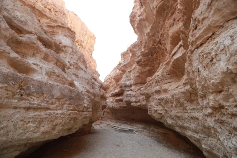 Le désert au cœur de l’hiver, c’est la promesse d’un grand bol d’air, de couchers de soleil flamboyants et d’un réveillon pas comme les autres. Nous créons pour vous un circuit Sud Tunisie totalement privé, rythmé par des excursions dans le Sahara tunisien, des oasis de montagne, des dunes de Douz à Ksar Ghilane, des maisons troglodytes de Matmata aux ksour de Tataouine, sans oublier le mythique Chott el-Jérid et les décors de cinéma près de Tozeur. À chaque étape : chauffeur-guide francophone, 4×4 climatisé, hébergements de caractère et bivouac sous les étoiles pour célébrer la fin d’année dans une atmosphère chaleureuse et authentique. Pourquoi choisir le Sud tunisien pour le réveillon ? Climat doux, paysages mythiques et ambiance 100 % désert Décembre et janvier offrent des journées lumineuses (15–22 °C) et des nuits fraîches idéales pour le bivouac (4–10 °C). Le Sahara en Tunisie déploie ici toute sa palette : miroirs de sel du Chott el-Jérid, dunes blondes, oasis de montagne (Chebika, Tamerza, Mides), villages enracinés dans la pierre, sources chaudes, pistes secrètes où le 4×4 se faufile en douceur. On vient pour déconnecter, respirer, randonner, chevaucher un dromadaire au coucher du soleil, goûter à une cuisine du terroir et vivre un réveillon dans le désert aux mille étoiles. Pour explorer des idées d’itinéraires, feuilletez nos propositions de circuits désert Tunisie : Circuits Désert – sudtunisie.com . Nos circuits Sahara privés : 3, 5 ou 8 jours – Itinéraires modulables selon votre rythme Nous concevons des voyages sur mesure qui collent à vos dates, votre budget et vos envies. Trois formats plébiscités : 3 jours express – L’essentiel du Sahara en un clin d’œil Jour 1 — Tozeur ▸ Chott el-Jérid ▸ Douz : accueil à l’aéroport, traversée des étendues salines (arrêts photo sur les teintes roses et les reflets), déjeuner à Douz, balade à dos de dromadaire au sunset, dîner aux lampions, nuit en camp. Jour 2 — Douz ▸ Ksar Ghilane : piste douce vers l’erg, bain en source chaude, option quad/buggy (selon envie), pause thé à la menthe, soirée conviviale, ciel profond et constellations. Jour 3 — Matmata ▸ Tozeur/Djerba : maisons troglodytes, haltes panoramiques, artisanat, transfert retour. 5 jours signature – L’équilibre parfait entre dunes, oasis et patrimoine Jour 1 — Oasis de montagne : Chebika, Tamerza, Mides ; sentiers accessibles, cascades, vues spectaculaires ; coucher de soleil sur Ong Jmel. Jour 2 — Chott el-Jérid & Douz : safari photo, initiation aux pistes sahariennes, dîner d’épices et dattes. Jour 3 — Douz ▸ Ksar Ghilane : méharée, source chaude, dunes orangées, veillée au camp. Jour 4 — Tataouine & les ksour : Chenini, Ksar Ouled Soltane, Ksar Hadada ; greniers fortifiés, légendes, déjeuner terroir. Jour 5 — Matmata ▸ Tozeur/Djerba : géologie lunaire, ateliers poterie, retour. 8 jours immersion – Grand Sahara, grand art de vivre Vous prenez le temps : deux nuits en camp, randonnées additionnelles, ateliers de cuisine, visites élargies de villages, observations du ciel et pauses photo au fil des ergs. Idées à picorer et combiner ici : Circuits Désert . Expériences phares : dromadaire, quad, randonnées, bivouac, gastronomie locale Méharée & quad : l’allure dorée du dromadaire au sunset, le frisson du quad ou du buggy sur des boucles sûres et encadrées. Randonnées adaptées : canyons de Chebika/Tamerza/Mides, crêtes douces de l’erg, sentiers au fil de l’eau ; niveaux modulables et pauses contemplatives. Nos idées : Randonnée montagne & Sahara . Bivouac sous les étoiles : tente privative, literie chaude, dîner au feu de bois, musique bédouine ; parfois, une initiation à l’astronomie pour lire la Voie lactée. Cuisine du Sud : couscous fin, méchoui, tajines parfumés, pain cuit dans le sable, dattes deglet nour, huile d’olive nouvelle ; options végétariennes et régimes spéciaux sur demande. Journées “explorer” : mix 4×4 + marche + dromadaire/quad ; envies du jour, excursion à la carte : Excursion en Tunisie . Inspiration & conseils d’initiés : récits, itinéraires et retours voyageurs sur notre Blog Excursions Tunisie . Réveillon dans le désert : une fête de fin d’année intime, élégante et authentique Oubliez les salles bondées : ici, le réveillon Sahara Tunisie se vit au grand air. Table dressée sous les étoiles, lanternes, musique douce, compte à rebours autour du feu, toast à la menthe fraîche et pâtisseries du Sud. Nous pouvons prévoir : menu de fête, gâteau personnalisé, bar à thés & épices, photographe, surprises enfants, et même une mini séance d’astronomie pour pointer les constellations. Au petit matin, café fumant, dunes orangées et balade légère : parfait pour démarrer la nouvelle année du bon pied. Hébergements & navettes : confort, charme et fluidité logistique Du tarmac à la première dune, on s’occupe de tout : suivi de vols, accueil personnalisé et transfert privé. Notre service de navette aéroport est ponctuel, sûr et souple (sièges enfant, stops utiles, arrivées tardives) : Navette aéroport – sudtunisie.com . Côté nuits, tout est possible : Camps confort ou premium : tentes privatives, literie chaude, sanitaires (selon catégorie), dîners aux lampions. Maisons troglodytes & ksour : murs de pierre, patios, fraîcheur et charme d’époque. Hôtels de charme en oasis : jardins, tables locales, parfois piscine (selon saison). Itinéraire « Réveillon Prestige » – Exemple détaillé sur 5 jours Jour 1 – Arrivée Tozeur/Djerba & oasis Accueil aéroport, navette privée, installation, balade au coucher du soleil parmi les palmiers, dîner terroir. Jour 2 – Montagne & canyons Chebika, Tamerza, Mides : randonnées faciles, panoramas, déjeuner panoramique ; sunset sur Ong Jmel. Jour 3 – Chott el-Jérid & Douz Mirages et teintes roses, villages de sables, méharée au crépuscule, atelier pain de sable, veillée conviviale. Jour 4 – Ksar Ghilane & Réveillon Bain en source chaude, option quad, installation au camp, dîner de réveillon, musique et étoiles. Jour 5 – Matmata & retour Maisons troglodytes, céramiques et vues lunaires, transfert retour. Variantes possibles : journée ksour de Tataouine (Chenini, Ksar Ouled Soltane, Ksar Hadada) ou extension mer à Djerba. Conseils pratiques : météo, équipement, santé & sécurité, formalités Saisonnalité : fin d’année = lumière douce, affluence raisonnable, prix mesurés, le combo parfait pour un circuit Sud Tunisie. Équipement : chaussures de marche, coupe-vent, polaire/doudoune légère pour le soir, bonnet & gants en bivouac, cheich pour le sable, lunettes UV 400, crème SPF. Photo & énergie : protéger l’appareil du sable, batteries de rechange, powerbank. Santé & sécurité : eau en bouteille, hygiène soignée au camp, itinéraires vérifiés, conduite prudente en 4×4, équipe réactive. Familles : pauses ludiques (dromadaires, ateliers), distances adaptées, dîners avancés, sièges enfant en transfert. Voyageur responsable : respecter les lieux, limiter le plastique, soutenir l’artisanat local (poterie, tissage, dattes). Pour les marcheurs réguliers, nos idées rando Sahara sont ici : Randonnée Montagne & Sahara . Pour qui ? Couples, familles, groupes d’amis, entreprises (team building dans le désert) Couples : bivouac cosy, dîner privé, séance photo au sunset, petit-déjeuner face aux dunes. Familles : enfants fascinés par les dromadaires et le feu de camp ; programmes souples. Groupes d’amis : quads, méharée, défis photo, longues veillées. Entreprises : team building Sahara Tunisie, ateliers de cohésion, dîners de gala sous les étoiles, logistique événementielle précise. Transparence prix & devis rapide : votre budget, votre tempo Expliquez-nous vos dates, votre aéroport d’arrivée, la taille du groupe, vos envies (bivouac, confort, activités). Nous vous envoyons un projet chiffré clair et des options à la carte. Demande en 1 minute : Devis voyage désert – 100 % gratuit . FAQ – Questions fréquentes avant un circuit “Réveillon Sahara Tunisie” Peut-on voyager avec des enfants en décembre ? Oui. Programmes adaptés, pauses fréquentes, sièges auto, dîners plus tôt, activités douces (contes, étoiles, atelier pain de sable). Quelle est la bonne durée pour un premier “circuit Sud Tunisie” ? 5 jours offrent un rythme idéal ; 3 jours concentrent l’essentiel ; 8 jours permettent l’immersion totale avec deux nuits en camp. Les campements sont-ils confortables ? Selon la catégorie choisie : tentes privatives, literie chaude, sanitaires partagés ou privatifs, dîners soignés. Possibilité de camp premium. Peut-on combiner dromadaire, quad et 4×4 ? Oui, nous bâtissons une excursion Sahara Tunisie à la carte : méharée au sunset, boucle en quad, pistes en 4×4, haltes photo. Voyez nos idées : Excursions en Tunisie . Quid des navettes aéroport tardives ? Nous assurons les arrivées de nuit, le suivi des vols et les besoins spécifiques (poussette, stops pharmacie). Infos : Service Navette Aéroport . Où trouver des idées d’itinéraires et des récits de voyage ? Parcourez nos circuits désert et notre blog : Circuits Désert Blog Excursions Tunisie Et les randonnées ? Du canyon facile aux crêtes sablonneuses, on adapte les distances : Randonnée Montagne & Sahara . Avis, photos, témoignages : votre retour fait grandir la communauté Après votre voyage, partagez votre expérience, vos photos et vos conseils – c’est précieux pour les futurs voyageurs et pour nous aider à affiner encore les détails : Laissez un avis sur TripAdvisor : Sud Tunisie – Tozeur . Passer à l’action : réservez votre fête de fin d’année dans le Sahara Vous rêvez d’un réveillon dans le désert qui vous ressemble ? Nous mettons la logistique au cordeau, l’écoute au centre et le plaisir de voyager au cœur de chaque étape. Découvrez nos circuits désert Tunisie et composez votre itinéraire. Piochez une excursion en Tunisie pour une journée intense. Préparez vos randonnées Montagne & Sahara . Simplifiez vos arrivées/départs avec la navette aéroport . Inspirez-vous sur le blog des excursions . Obtenez un devis gratuit et rapide pour bloquer vos dates. En une phrase : un circuit Sud Tunisie pour la fin d’année, en privé, c’est l’alliance d’un Sahara grandiose, d’une logistique sereine et d’une fête intime sous la Voie lactée. À très vite sur les pistes.