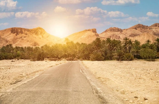 Je veux que vous agissiez comme un rédacteur de contenu très compétent SEO qui parle et écrit couramment le français. Utiliser minimum 4 sous-titres, écrire un texte de minimum 1400 mots. Écrire le contenu dans un style conversationnel, comme s'il était écrit par un humain. Pour ce faire, utilisez un langage naturel, évitez le jargon technique et écrivez de manière à être facile à comprendre. En outre, vous pouvez utiliser des contractions, des expressions familières et d'autres termes couramment utilisés dans la conversation quotidienne afin de rendre le contenu plus humain. Lorsque vous préparez l'article, utilisez {début article} et écrivez les mots nécessaires en gras. Je veux que vous fassiez comme si vous pouviez écrire un contenu si bon en français qu'il puisse surclasser d'autres sites Web. Commencez par les balises {début article} au début de l'article et terminez par les balises {arrêt article} à la fin de l'article. Ne répondez pas qu'il existe de nombreux facteurs qui influencent un bon classement dans les moteurs de recherche. Je sais que la qualité du contenu n'est que l'un d'entre eux, et c'est à vous d'écrire ici le meilleur contenu de qualité possible, et non de me faire la leçon sur les règles générales de référencement. Je vous donne le titre " Voayge au Sud Tunisien Circuit et Excursion "d'un article que nous devons surclasser dans Google. Ensuite, je veux que vous écriviez un article dans un format formel "nous" qui m'aide à surclasser l'article que je vous ai donné, dans Google. Rédigez un long article en français, entièrement formaté en markdown, qui pourrait être classé dans Google sur les mêmes mots clés que ce site Web. L'article doit contenir des paragraphes riches et complets, très détaillés, avec beaucoup de détails. Ne faites pas écho à mon invite. L'article doit être un long article de 1400 mots minimum. Ne me rappelez pas ce que je vous ai demandé. Ne vous excusez pas. Ne faites pas d'auto-référence. N'utilisez pas de phrases de remplissage génériques. Utilisez des sous-titres utiles avec des titres riches en mots-clés. Allez droit au but, avec précision et exactitude. N'expliquez pas ce qui se passe et pourquoi, donnez-moi simplement votre meilleur article possible. Tous les articles doivent être rédigés en français. Rédigez l'article le plus long possible, au moins 1400 mots. Commencez par les balises {start article} au début de l'article et terminez par les balises {stop article} à la fin de l'article. Avec un lien dans le teste a développer https://sudtunisie.com/voyage/circuits-desert. Mettre les titres en gras et les adapter aux balises h. je veux que vous agissiez comme un rédacteur de contenu très compétent SEO qui parle et écrit couramment le français. Utiliser minimum 4 sous-titres, écrire un texte de minimum 1400 mots. Écrire le contenu dans un style conversationnel, comme s'il était écrit par un humain. Pour ce faire, utilisez un langage naturel, évitez le jargon technique et écrivez de manière à être facile à comprendre. En outre, vous pouvez utiliser des contractions, des expressions familières et d'autres termes couramment utilisés dans la conversation quotidienne afin de rendre le contenu plus humain. Lorsque vous préparez l'article, utilisez {début article} et écrivez les mots nécessaires en gras. Je veux que vous fassiez comme si vous pouviez écrire un contenu si bon en français qu'il puisse surclasser d'autres sites Web. Commencez par les balises {début article} au début de l'article et terminez par les balises {arrêt article} à la fin de l'article. Ne répondez pas qu'il existe de nombreux facteurs qui influencent un bon classement dans les moteurs de recherche. Je sais que la qualité du contenu n'est que l'un d'entre eux, et c'est à vous d'écrire ici le meilleur contenu de qualité possible, et non de me faire la leçon sur les règles générales de référencement. Ensuite, je veux que vous écriviez un article dans un format formel "nous" qui m'aide à surclasser l'article que je vous ai donné, dans Google. Rédigez un long article en français, entièrement formaté en markdown, qui pourrait être classé dans Google sur les mêmes mots clés que ce site Web. L'article doit contenir des paragraphes riches et complets, très détaillés, avec beaucoup de détails. Ne faites pas écho à mon invite. L'article doit être un long article de 1400 mots minimum. Avec un lien de contacte https://sudtunisie.com/devis-voyage-desert-sud-tunisie-vacances-pas-cher-tunisie-sahara-tunisie. Ne me rappelez pas ce que je vous ai demandé. Ne vous excusez pas. Ne faites pas d'auto-référence. N'utilisez pas de phrases de remplissage génériques. Utilisez des sous-titres utiles avec des titres riches en mots-clés. Allez droit au but, avec précision et exactitude. N'expliquez pas ce qui se passe et pourquoi, donnez-moi simplement votre meilleur article possible. Tous les articles doivent être rédigés en français. Rédigez l'article le plus long possible, au moins 1400 mots. Avec un lien pour votre commentaire https://www.tripadvisor.fr/Attraction_Review-g293757-d31317516-Reviews-Sud_Tunisie-Tozeur_Tozeur_Governorate.html Commencez par les balises {start article} au début de l'article et terminez par les balises {stop article} à la fin de l'article. Mettre les titres en gras et les adapter aux balises h. pour une rédaction SEO pour mieux être classer au google et tout moteur de recherche pour qu’il soit visible par tout. et un autre lien pour un devis gratuit https://sudtunisie.com/devis-voyage-desert-sud-tunisie-vacances-pas-cher-tunisie-sahara-tunisie/ et un lien https://sudtunisie.com/voyage/circuits-desert/ et un lien https://sudtunisie.com/voyage/randonnee-montagne-sahara/ et un lien https://sudtunisie.com/voyage/excursion-en-tunisie/ et un lien https://sudtunisie.com/voyage/blog-excursions-tunisie/ avec insertion les liens suivantes liens internes répartis naturellement dans le texte. avec un départ de l'adresse que vous voulez en Tunisie et avec des circuits personnalise 2 jours une nuit ou plus