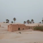 Découvrir la Tunisie, c’est goûter à une palette de paysages étonnamment variés : désert du Sahara, oasis de montagne, villages troglodytiques, îles méditerranéennes et ksour millénaires. Nous organisons des circuits et excursions sur-mesure pour explorer le Sud tunisien à votre rythme : Tozeur, Douz, Ksar Ghilane, Matmata, Chenini, Djerba… Avec nos guides officiels, nos chauffeurs 4×4 et nos hébergements vérifiés, vous profitez de l’essentiel : la beauté des lieux, l’authenticité des rencontres et le luxe d’une logistique fluide. Pour visualiser les itinéraires et bâtir le vôtre, consultez nos circuits désert . Pourquoi choisir un circuit ou une excursion en Tunisie avec nous ? La Tunisie est l’une des meilleures portes d’entrée du Sahara : distances raisonnables, climat clément la majeure partie de l’année, patrimoine riche et hospitalité intacte. Notre approche privilégie : La sécurité et le confort : véhicules entretenus, équipes locales expérimentées, itinéraires testés. La personnalisation : circuits privatifs, horaires adaptés à la lumière, options actives ou détente. La transparence : devis lisible, inclus/non inclus explicités. Demandez votre devis gratuit et personnalisé en 2 minutes. L’authenticité : rencontres, artisanat, gastronomie d’oasis, nuits sous les étoiles. Dès l’atterrissage, oubliez le stress : notre navette aéroport vous attend à Tozeur, Djerba ou Tunis et vous conduit directement à l’oasis, à l’hôtel ou au campement. Panorama des incontournables : du Chott aux ergs dorés Tozeur & les oasis de montagne – Chebika, Tamerza, Mides À Tozeur, porte d’entrée du Chott El Jerid, s’ouvrent les oasis de montagne : Chebika et ses terrasses verdoyantes, Tamerza et sa cascade, Mides et son canyon sculpté. Les palmeraies contrastent avec les parois ocre. Lumière rasante, sentiers faciles : idéal pour une randonnée montagne & Sahara . Douz – la “porte du désert” Cap au sud pour rejoindre Douz, point de départ des mers de dunes. Ici, la balade à dromadaire au coucher de soleil est une image de carte postale devenue réalité. Les marchés regorgent de dattes Deglet Nour et d’artisanat nomade. Ksar Ghilane – oasis et source chaude Au cœur des ergs, Ksar Ghilane déroule sa palmeraie et sa source chaude. Farniente sous les palmes, bain thermal, boucle 4×4 vers un fortin offrant un panorama à 360° sur les dunes, puis dîner au camp, lanternes allumées. Matmata & Chenini – troglodytes et ksour Matmata dévoile des habitats troglodytiques creusés à même la roche. Plus à l’est, Chenini et ses ksour témoignent d’une architecture ingénieuse, façonnée pour conserver les récoltes et se protéger. Sentiers minéraux, contre-jours spectaculaires et artisanat vivant. Djerba – pause iodée et artisanat Djerba la douce complète l’aventure saharienne : Houmt Souk, Guellala et ses potiers, marchés, poissons grillés, ruelles blanches et bleues. Un équilibre parfait entre désert et Méditerranée. Pour vous repérer et comparer, parcourez nos circuits désert et nos excursions en Tunisie . Nos formats de voyage : excursion, mini-circuit, grand tour Excursions ½ journée à 2 jours Pensées pour les voyageurs installés à Tozeur, Douz ou Djerba, ces sorties ciblées cochent les incontournables sans courir : oasis de montagne, Chott, dromadaire, source chaude. Idéal pour une première immersion. Inspirez-vous de nos excursions en Tunisie . Mini-circuits 3 à 5 jours Le meilleur équilibre découverte/confort : Tozeur – Douz – Ksar Ghilane – Matmata – Djerba. Transferts optimisés, nuits en camp et maisons d’hôtes, couchers de soleil magistraux. Base parfaite pour un premier circuit Sahara Tunisie. Grands circuits 6 à 10 jours Pour tout voir sans se presser : oasis de montagne, grandes mers de dunes, ksour, villages berbères, balnéaire à Djerba, variantes par Douiret, Toujane, Médenine. Possibilité d’insérer des journées actives (voir randonnée montagne & Sahara ). Comparez, puis validez un tracé sur circuits désert ; nous l’affinons ensemble avant d’émettre un devis clair et détaillé . Itinéraires recommandés : exemples modulables jour par jour 3 jours – “Premiers pas sahariens” Jour 1 : Tozeur – Chebika – Tamerza – Mides Arrivée, navette privée (voir service aéroport ), installation. Boucle dans les oasis de montagne, pauses photo et café d’oasis. Jour 2 : Chott El Jerid – Douz – campement Mirages du Chott, Douz, dromadaire en option, coucher de soleil, dîner aux lanternes, nuit en tente privative. Jour 3 : Dunes matinales – Tozeur/Djerba Balade sur les crêtes, transfert retour. Option plage à Djerba. 5 jours – “Oasis, dunes & source chaude” Jour 1 : Tozeur & palmeraie – balade douce, briefing, dîner de spécialités. Jour 2 : Chebika – Tamerza – Mides – lumière rasante, canyon et cascades. Jour 3 : Chott – Douz – nuit au camp – pain mella cuit sous le sable, conte du désert. Jour 4 : Ksar Ghilane – source chaude – fortin – baignade, 4×4, farniente sous les palmes. Jour 5 : Matmata – Djerba – troglodytes, artisanat, poissons grillés. 7 jours – “Grand Sud tunisien en beauté” Jour 1 : Arrivée – oasis – installation, navette incluse. Jour 2 : Chebika – Tamerza – Mides – variante randonnée . Jour 3 : Chott – Douz – marché, dromadaire au coucher du soleil. Jour 4 : Mer de dunes – bivouac confort – hors-piste, pique-nique, ciel profond. Jour 5 : Ksar Ghilane – source chaude, fortin, camp ou maison d’hôtes. Jour 6 : Matmata – Chenini – ksour, sentiers minéraux, artisanat. Jour 7 : Djerba – Guellala, Houmt Souk, achats, transfert départ. Ces canevas ne sont que points de départ : nous modulons durées, allures, hébergements et activités jusqu’à obtenir votre parcours signature. Parcourez circuits désert pour imaginer le vôtre. Expériences signatures : vivre le désert, pas seulement le voir Balade à dromadaire : icône saharienne, surtout au crépuscule. 4×4 “lumière dorée” : haltes photo sur les crêtes d’erg. Randonnées faciles à modérées : oasis de montagne, bord d’erg, gorges et plateaux. Rencontres & ateliers : poterie à Guellala, tissage, épices, cuisine d’oasis. Bien-être : source chaude de Ksar Ghilane, pause sous les palmes. Nuits étoilées : ciel profond, voie lactée, initiation astrophotographie. Envie d’idées rapides ? Parcourez nos excursions en Tunisie et gardez un œil sur le blog des excursions Tunisie pour les nouveautés et conseils terrain. Hébergements & campements : charme, confort et silence Nous sélectionnons des adresses où l’on dort bien et l’on rêve mieux : Maisons d’hôtes d’oasis : patios, cuisine familiale, hospitalité. Hôtels 3★–5★ : confort international, piscines selon étapes. Campements sahariens : tentes privées, literie, sanitaires partagés ou privatifs suivant la catégorie, douches chaudes. Bivouacs exclusifs (sur demande) : sentiment d’être seuls au monde avec encadrement de sécurité. Chaque hébergement est contrôlé : propreté, calme nocturne, qualité de la literie, localisation, sécurité, qualité de table. Logistique simplifiée : transferts, rythmes, sécurité Transferts aéroport assurés par notre navette (Tozeur, Djerba, Tunis). Rythmes photo : départs ajustés aux heures dorées et bleues. Sécurité : guides certifiés, plans B météo, communication radio sur certaines pistes. Respect des lieux : gestion des déchets, sensibilisation, économie locale. Quand partir ? Climat et saisons du Sud tunisien Octobre–avril : période idéale pour le désert (journées douces, soirées fraîches). Mai–juin et septembre : chaleur modérée, parfait pour mélanger désert et côtes. Juillet–août : très chaud dans l’intérieur ; privilégier les départs tôt et les pauses à l’ombre ou opter pour un mix avec Djerba. Nous adaptons horaires, hydratation, distances et ombrages selon la saison, notamment avec des options randonnée calibrées. Conseils pratiques : s’équiper malin, voyager serein Vêtements en couches : t-shirt technique, polaire/coupe-vent, pantalon léger. Soleil : lunettes, chapeau/chèche, SPF, gourde réutilisable. Chaussures : baskets ou rando légère (sable + sentiers). Tech : batteries externes, chiffon anti-sable, petit trépied. Santé : trousse basique, assurance voyage ; hydratation régulière. Enfants : étapes courtes, pauses jeu dans les dunes, collations, couvre-chef. Tarifs & réservation : clarté et personnalisation Les tarifs dépendent de la durée, du niveau d’hébergement, des activités (dromadaire, bivouac exclusif, ateliers), de la taille du groupe et de la saison. Pour obtenir un prix précis et sans surprise, demandez un devis gratuit et rapide . Pendant votre réflexion, comparez nos circuits désert et nos excursions : nous personnalisons chaque ligne. FAQ – Circuit & excursion en Tunisie (Sud & Sahara) Combien de jours pour un premier circuit ? 5 à 7 jours permettent d’enchaîner oasis, dunes et villages sans se presser. 3–4 jours fonctionnent pour une immersion express. Circuit privatif vs excursion ? Le circuit combine plusieurs étapes (2–7 nuits). L’excursion (½ journée, 1–2 jours) cible un site précis. Inspirez-vous de nos excursions en Tunisie . Quand prévoir une nuit en camp ? Dès que vous atteignez Douz ou Ksar Ghilane : la nuit sous les étoiles avec dîner au feu de camp reste le souvenir numéro un. Peut-on randonner avec des enfants ? Oui, sur des boucles courtes et ombragées. Voir nos idées randonnée montagne & Sahara . Comment se passent les transferts ? Notre navette aéroport vous prend en charge à l’heure de votre vol, pancarte nominative, eau à bord. Quel budget prévoir ? Variable selon durée, hébergement et options. Obtenez un devis détaillé en quelques clics. Avis & confiance : la parole aux voyageurs La meilleure preuve, ce sont vos retours. Lisez les témoignages et notes sur Tripadvisor : Sud Tunisie – Tozeur . Ces avis reflètent notre exigence et nourrissent notre démarche d’amélioration continue. Réserver maintenant : votre Sahara, votre tempo Explorez les options sur circuits désert . Partagez vos dates, budget et envies (dromadaire, 4×4, bivouac, artisanat). Recevez une proposition sur-mesure avec un itinéraire clair et les meilleurs créneaux photo. Validez avec un devis gratuit et transparent . Pour nourrir l’inspiration, gardez en favoris : Excursions en Tunisie Blog – excursions Tunisie Randonnée montagne & Sahara Service de navette aéroport Circuit Sahara Tunisie, excursion désert Sud tunisien, Tozeur, Douz, Ksar Ghilane, Matmata, Chenini, Djerba : des mots-clés, certes, mais surtout des moments vécus – lumière dorée, silence, rencontres, table généreuse. Ici, tout invite à ralentir et à respirer. À vous le Sahara, sans filtre et sans détour.