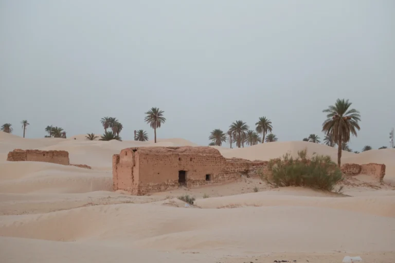 Découvrir la Tunisie, c’est goûter à une palette de paysages étonnamment variés : désert du Sahara, oasis de montagne, villages troglodytiques, îles méditerranéennes et ksour millénaires. Nous organisons des circuits et excursions sur-mesure pour explorer le Sud tunisien à votre rythme : Tozeur, Douz, Ksar Ghilane, Matmata, Chenini, Djerba… Avec nos guides officiels, nos chauffeurs 4×4 et nos hébergements vérifiés, vous profitez de l’essentiel : la beauté des lieux, l’authenticité des rencontres et le luxe d’une logistique fluide. Pour visualiser les itinéraires et bâtir le vôtre, consultez nos circuits désert . Pourquoi choisir un circuit ou une excursion en Tunisie avec nous ? La Tunisie est l’une des meilleures portes d’entrée du Sahara : distances raisonnables, climat clément la majeure partie de l’année, patrimoine riche et hospitalité intacte. Notre approche privilégie : La sécurité et le confort : véhicules entretenus, équipes locales expérimentées, itinéraires testés. La personnalisation : circuits privatifs, horaires adaptés à la lumière, options actives ou détente. La transparence : devis lisible, inclus/non inclus explicités. Demandez votre devis gratuit et personnalisé en 2 minutes. L’authenticité : rencontres, artisanat, gastronomie d’oasis, nuits sous les étoiles. Dès l’atterrissage, oubliez le stress : notre navette aéroport vous attend à Tozeur, Djerba ou Tunis et vous conduit directement à l’oasis, à l’hôtel ou au campement. Panorama des incontournables : du Chott aux ergs dorés Tozeur & les oasis de montagne – Chebika, Tamerza, Mides À Tozeur, porte d’entrée du Chott El Jerid, s’ouvrent les oasis de montagne : Chebika et ses terrasses verdoyantes, Tamerza et sa cascade, Mides et son canyon sculpté. Les palmeraies contrastent avec les parois ocre. Lumière rasante, sentiers faciles : idéal pour une randonnée montagne & Sahara . Douz – la “porte du désert” Cap au sud pour rejoindre Douz, point de départ des mers de dunes. Ici, la balade à dromadaire au coucher de soleil est une image de carte postale devenue réalité. Les marchés regorgent de dattes Deglet Nour et d’artisanat nomade. Ksar Ghilane – oasis et source chaude Au cœur des ergs, Ksar Ghilane déroule sa palmeraie et sa source chaude. Farniente sous les palmes, bain thermal, boucle 4×4 vers un fortin offrant un panorama à 360° sur les dunes, puis dîner au camp, lanternes allumées. Matmata & Chenini – troglodytes et ksour Matmata dévoile des habitats troglodytiques creusés à même la roche. Plus à l’est, Chenini et ses ksour témoignent d’une architecture ingénieuse, façonnée pour conserver les récoltes et se protéger. Sentiers minéraux, contre-jours spectaculaires et artisanat vivant. Djerba – pause iodée et artisanat Djerba la douce complète l’aventure saharienne : Houmt Souk, Guellala et ses potiers, marchés, poissons grillés, ruelles blanches et bleues. Un équilibre parfait entre désert et Méditerranée. Pour vous repérer et comparer, parcourez nos circuits désert et nos excursions en Tunisie . Nos formats de voyage : excursion, mini-circuit, grand tour Excursions ½ journée à 2 jours Pensées pour les voyageurs installés à Tozeur, Douz ou Djerba, ces sorties ciblées cochent les incontournables sans courir : oasis de montagne, Chott, dromadaire, source chaude. Idéal pour une première immersion. Inspirez-vous de nos excursions en Tunisie . Mini-circuits 3 à 5 jours Le meilleur équilibre découverte/confort : Tozeur – Douz – Ksar Ghilane – Matmata – Djerba. Transferts optimisés, nuits en camp et maisons d’hôtes, couchers de soleil magistraux. Base parfaite pour un premier circuit Sahara Tunisie. Grands circuits 6 à 10 jours Pour tout voir sans se presser : oasis de montagne, grandes mers de dunes, ksour, villages berbères, balnéaire à Djerba, variantes par Douiret, Toujane, Médenine. Possibilité d’insérer des journées actives (voir randonnée montagne & Sahara ). Comparez, puis validez un tracé sur circuits désert ; nous l’affinons ensemble avant d’émettre un devis clair et détaillé . Itinéraires recommandés : exemples modulables jour par jour 3 jours – “Premiers pas sahariens” Jour 1 : Tozeur – Chebika – Tamerza – Mides Arrivée, navette privée (voir service aéroport ), installation. Boucle dans les oasis de montagne, pauses photo et café d’oasis. Jour 2 : Chott El Jerid – Douz – campement Mirages du Chott, Douz, dromadaire en option, coucher de soleil, dîner aux lanternes, nuit en tente privative. Jour 3 : Dunes matinales – Tozeur/Djerba Balade sur les crêtes, transfert retour. Option plage à Djerba. 5 jours – “Oasis, dunes & source chaude” Jour 1 : Tozeur & palmeraie – balade douce, briefing, dîner de spécialités. Jour 2 : Chebika – Tamerza – Mides – lumière rasante, canyon et cascades. Jour 3 : Chott – Douz – nuit au camp – pain mella cuit sous le sable, conte du désert. Jour 4 : Ksar Ghilane – source chaude – fortin – baignade, 4×4, farniente sous les palmes. Jour 5 : Matmata – Djerba – troglodytes, artisanat, poissons grillés. 7 jours – “Grand Sud tunisien en beauté” Jour 1 : Arrivée – oasis – installation, navette incluse. Jour 2 : Chebika – Tamerza – Mides – variante randonnée . Jour 3 : Chott – Douz – marché, dromadaire au coucher du soleil. Jour 4 : Mer de dunes – bivouac confort – hors-piste, pique-nique, ciel profond. Jour 5 : Ksar Ghilane – source chaude, fortin, camp ou maison d’hôtes. Jour 6 : Matmata – Chenini – ksour, sentiers minéraux, artisanat. Jour 7 : Djerba – Guellala, Houmt Souk, achats, transfert départ. Ces canevas ne sont que points de départ : nous modulons durées, allures, hébergements et activités jusqu’à obtenir votre parcours signature. Parcourez circuits désert pour imaginer le vôtre. Expériences signatures : vivre le désert, pas seulement le voir Balade à dromadaire : icône saharienne, surtout au crépuscule. 4×4 “lumière dorée” : haltes photo sur les crêtes d’erg. Randonnées faciles à modérées : oasis de montagne, bord d’erg, gorges et plateaux. Rencontres & ateliers : poterie à Guellala, tissage, épices, cuisine d’oasis. Bien-être : source chaude de Ksar Ghilane, pause sous les palmes. Nuits étoilées : ciel profond, voie lactée, initiation astrophotographie. Envie d’idées rapides ? Parcourez nos excursions en Tunisie et gardez un œil sur le blog des excursions Tunisie pour les nouveautés et conseils terrain. Hébergements & campements : charme, confort et silence Nous sélectionnons des adresses où l’on dort bien et l’on rêve mieux : Maisons d’hôtes d’oasis : patios, cuisine familiale, hospitalité. Hôtels 3★–5★ : confort international, piscines selon étapes. Campements sahariens : tentes privées, literie, sanitaires partagés ou privatifs suivant la catégorie, douches chaudes. Bivouacs exclusifs (sur demande) : sentiment d’être seuls au monde avec encadrement de sécurité. Chaque hébergement est contrôlé : propreté, calme nocturne, qualité de la literie, localisation, sécurité, qualité de table. Logistique simplifiée : transferts, rythmes, sécurité Transferts aéroport assurés par notre navette (Tozeur, Djerba, Tunis). Rythmes photo : départs ajustés aux heures dorées et bleues. Sécurité : guides certifiés, plans B météo, communication radio sur certaines pistes. Respect des lieux : gestion des déchets, sensibilisation, économie locale. Quand partir ? Climat et saisons du Sud tunisien Octobre–avril : période idéale pour le désert (journées douces, soirées fraîches). Mai–juin et septembre : chaleur modérée, parfait pour mélanger désert et côtes. Juillet–août : très chaud dans l’intérieur ; privilégier les départs tôt et les pauses à l’ombre ou opter pour un mix avec Djerba. Nous adaptons horaires, hydratation, distances et ombrages selon la saison, notamment avec des options randonnée calibrées. Conseils pratiques : s’équiper malin, voyager serein Vêtements en couches : t-shirt technique, polaire/coupe-vent, pantalon léger. Soleil : lunettes, chapeau/chèche, SPF, gourde réutilisable. Chaussures : baskets ou rando légère (sable + sentiers). Tech : batteries externes, chiffon anti-sable, petit trépied. Santé : trousse basique, assurance voyage ; hydratation régulière. Enfants : étapes courtes, pauses jeu dans les dunes, collations, couvre-chef. Tarifs & réservation : clarté et personnalisation Les tarifs dépendent de la durée, du niveau d’hébergement, des activités (dromadaire, bivouac exclusif, ateliers), de la taille du groupe et de la saison. Pour obtenir un prix précis et sans surprise, demandez un devis gratuit et rapide . Pendant votre réflexion, comparez nos circuits désert et nos excursions : nous personnalisons chaque ligne. FAQ – Circuit & excursion en Tunisie (Sud & Sahara) Combien de jours pour un premier circuit ? 5 à 7 jours permettent d’enchaîner oasis, dunes et villages sans se presser. 3–4 jours fonctionnent pour une immersion express. Circuit privatif vs excursion ? Le circuit combine plusieurs étapes (2–7 nuits). L’excursion (½ journée, 1–2 jours) cible un site précis. Inspirez-vous de nos excursions en Tunisie . Quand prévoir une nuit en camp ? Dès que vous atteignez Douz ou Ksar Ghilane : la nuit sous les étoiles avec dîner au feu de camp reste le souvenir numéro un. Peut-on randonner avec des enfants ? Oui, sur des boucles courtes et ombragées. Voir nos idées randonnée montagne & Sahara . Comment se passent les transferts ? Notre navette aéroport vous prend en charge à l’heure de votre vol, pancarte nominative, eau à bord. Quel budget prévoir ? Variable selon durée, hébergement et options. Obtenez un devis détaillé en quelques clics. Avis & confiance : la parole aux voyageurs La meilleure preuve, ce sont vos retours. Lisez les témoignages et notes sur Tripadvisor : Sud Tunisie – Tozeur . Ces avis reflètent notre exigence et nourrissent notre démarche d’amélioration continue. Réserver maintenant : votre Sahara, votre tempo Explorez les options sur circuits désert . Partagez vos dates, budget et envies (dromadaire, 4×4, bivouac, artisanat). Recevez une proposition sur-mesure avec un itinéraire clair et les meilleurs créneaux photo. Validez avec un devis gratuit et transparent . Pour nourrir l’inspiration, gardez en favoris : Excursions en Tunisie Blog – excursions Tunisie Randonnée montagne & Sahara Service de navette aéroport Circuit Sahara Tunisie, excursion désert Sud tunisien, Tozeur, Douz, Ksar Ghilane, Matmata, Chenini, Djerba : des mots-clés, certes, mais surtout des moments vécus – lumière dorée, silence, rencontres, table généreuse. Ici, tout invite à ralentir et à respirer. À vous le Sahara, sans filtre et sans détour.