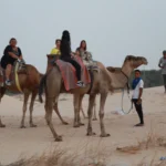 Plutôt que de terminer l’année dans le bruit et la frénésie, nous proposons de célébrer Noël et le Nouvel An au cœur du Sahara tunisien, là où le temps ralentit, les lumières se font dorées et le ciel étoilé vous enveloppe. En format 100 % privatif, nos circuits et excursions dans le désert du Sud tunisien marient authenticité, confort, sécurité et rythme sur-mesure. De Tozeur à Douz, de Matmata à Ksar Ghilane, nous orchestrons chaque détail pour que votre Fête de fin d’année devienne un souvenir majestueux. Pour visualiser les itinéraires et vous inspirer, explorez nos circuits désert conçus et testés par nos équipes terrain. Pourquoi choisir un réveillon dans le Sahara tunisien ? La fin d’année (décembre–janvier) se prête à merveille à la découverte du Sahara tunisien : l’air est clair, les journées sont douces, les soirées fraîches idéales pour un feu de camp et une nuit en campement. Loin des salles bondées, vous vivez un réveillon intime : coucher de soleil sur les dunes, dîner aux lanternes, musique traditionnelle, thé aux herbes, étoiles à perte de vue. Avec nous, chaque itinéraire est privatif : vous décidez du rythme, du niveau de confort, des activités (balade à dromadaire, randonnée facile, 4×4, ateliers artisanaux). Envie d’un avant-goût ? Parcourez nos excursions en Tunisie pour bâtir votre propre parcours. Nos engagements : sécurité, fluidité logistique et hébergements vérifiés Guides officiels et chauffeurs 4×4 expérimentés : navigation sûre, connaissance fine des pistes, histoires d’oasis qui donnent du relief à chaque étape. Logistique optimisée : transferts synchronisés, horaires intelligents pour profiter des plus belles lumières et éviter les foules. Hébergements contrôlés : maisons d’hôtes de charme, campements sahariens confortables, hôtels 3★ à 5★, bivouacs exclusifs sur demande. Cuisine locale : pains mella cuits sous le sable, dattes Deglet Nour, couscous du Sud, infusions d’herbes du désert. Transparence tarifaire : devis clair, inclus/non inclus explicites, personnalisation selon votre budget. Demandez un devis gratuit en 2 minutes. Dès l’atterrissage, libérez-vous du stress : notre navette aéroport vous accueille à Tozeur, Djerba ou Tunis et vous conduit directement vers l’oasis, l’hôtel ou le camp. Programme fin d’année (Noël & Nouvel An) – 5 à 8 jours en privatif Chaque voyage est taillé sur mesure, mais voici un canevas largement plébiscité pour la fin d’année, modulable en 5, 6, 7 ou 8 jours selon vos dates et envies. Jour 1 – Arrivée, oasis et premier regard sur le désert Accueil personnalisé, transfert privé vers votre hébergement. Balade douce dans la palmeraie, briefing avec votre guide, premiers parfums de dattes et d’agrumes. Dîner d’accueil, coucher de soleil si l’horaire le permet. Mise au point des détails du réveillon (musique, menu, champagne, feu de camp). Jour 2 – Chebika, Tamerza, Mides : les oasis de montagne Cap vers les oasis de montagne : Chebika et ses sentiers en gradins, Tamerza et ses cascades, Mides et son canyon spectaculaire. Lumière rasante de l’hiver, pauses photo, café d’oasis. En version active, ajoutez une randonnée montagne & Sahara (facile/modérée) pour saisir la diversité des reliefs. Jour 3 – Chott El Jerid & portes du désert à Douz Traversée du Chott El Jerid, lac salé aux reflets mirage. Arrivée à Douz, surnommée la « porte du désert ». Balade à dromadaire au coucher du soleil (option) puis route vers le camp : tente privative, literie douillette, douche chaude, ciel profond – la magie démarre. Jour 4 – Mer de dunes & bivouac confort Journée hors-piste entre ergs et regs. Pique-nique en pleine nature, initiation au pain tabouna/mella, temps de contemplation. En fin de journée, installation au campement saharien : dîner traditionnel, feu de camp, musique, contes du désert. Observation des étoiles : parfait pour une session astrophotographie. Jour 5 – Ksar Ghilane & source chaude Cap sur Ksar Ghilane, oasis emblématique ourlée de dunes, bain dans la source chaude sous les palmes. Boucle 4×4 vers un fortin pour un panorama à 360°. Fin d’après-midi libre pour savourer le silence du désert. Dîner et nuit au camp ou en maison d’hôtes selon vos préférences. Jour 6 – Matmata troglodytique, Chenini & ksour Route vers Matmata et ses maisons troglodytiques, rencontre avec des familles qui perpétuent un art de vivre millénaire. Puis Chenini (Tataouine) : ksar perché, greniers collectifs, sentiers minéraux et ocres. Séance photo au coucher de soleil. Nuit en maison d’hôtes ou retour vers Djerba. Jour 7 – Djerba & Houmt Souk, artisanat et saveurs Flânerie à Houmt Souk, visite de Guellala et de ses potiers, déjeuner de poissons. Derniers achats (huile d’olive, dattes, céramiques), remise de votre carnet souvenir et transfert aéroport. Jour 8 – Journée bonus & départ Selon l’horaire de vol : mini-excursion (salines, lagunes, villages), atelier cuisine ou balade détente. Transfert retour inclus. Ce squelette s’adapte à l’infini : insertion d’une randonnée montagne & Sahara plus sportive, nuit supplémentaire en plein erg, version « famille » avec étapes plus courtes, ou extension culturelle à Douiret, Toujane, Médenine. Inspirez-vous de nos circuits désert puis modulez chaque journée à votre mesure. Réveillon dans le désert : mise en scène d’un moment inoubliable Décor : dunes dorées, lanternes, table basse saharienne, nappes brodées, coussins berbères. Saveurs : chorba parfumée, méchoui au feu de bois, couscous du Sud, pâtisseries au miel, thé à la menthe et aux plantes d’oasis. Ambiance : musique traditionnelle, silence du désert, ciel strié d’étoiles. Minuit : toasts, douce chaleur du feu, photos et rires – une passage à la nouvelle année unique au monde. Nous réglons tout : menus spéciaux (végétarien, sans gluten), gâteau de fête, bouteille pour le toast, surprises pour les enfants, et un timing pensé pour profiter des plus belles lumières. Hébergements & campements : charme, confort et authenticité Maisons d’hôtes d’oasis : hospitalité chaleureuse, cuisine du terroir, patios parfumés d’agrumes. Hôtels 3★–5★ : confort international, piscines selon étapes, chambres familiales. Campements sahariens : tentes privées avec literie, sanitaires partagés ou privatifs selon catégorie, douches chaudes, électricité aux plages horaires prévues. Bivouacs exclusifs (sur demande) : sensation d’être seuls au monde avec encadrement de sécurité. Chaque adresse est contrôlée par nos soins : propreté, qualité de la literie, calme nocturne, accueil, proximité des sites et sécurité. Comparez les options, puis demandez un devis sur-mesure . Activités phares pour une fin d’année mémorable Balade à dromadaire au coucher du soleil. 4×4 hors-piste : ergs et regs, points de vue confidentiels. Randonnée montagne & Sahara : boucle facile à modérée pour respirer l’hiver saharien. Ateliers & rencontres : tissage, poterie à Guellala, épices, cuisine du désert. Bien-être : bain en source chaude à Ksar Ghilane. Photo & ciel nocturne : coaching lumière bleue/dorée, initiation astrophotographie. Envie de varier ? Piochez des idées dans nos excursions en Tunisie et nourrissez votre imagination avec le blog des excursions en Tunisie . Conseils pratiques fin d’année : météo, équipements, enfants Météo : journées douces, soirées fraîches. Prévoyez couches légères, polaire/coupe-vent, écharpe ou chèche, bonnet pour la nuit. Soleil : lunettes, crème SPF, baume à lèvres, gourde réutilisable. Chaussures : baskets/rando légère pour dunes et sentiers d’oasis. Tech/photo : batteries externes, chiffon anti-sable, petit trépied. Santé : trousse basique (pansements, antipyrétique), assurance voyage. Enfants : étapes courtes, temps de jeu dans les dunes, collation régulière, chapeaux. Côté transferts, réservez l’esprit libre : notre service de navette aéroport assure ponctualité et confort jusqu’au camp ou à l’oasis. Tarifs, disponibilités & devis gratuit Les prix varient selon la durée, le confort choisi, la taille du groupe et les options (randonnées, bivouac exclusif, activités spécifiques). Pour une idée précise et sans surprise, demandez votre devis gratuit et rapide . Pendant que vous explorez, gardez sous la main notre page circuits désert afin de comparer les itinéraires et d’optimiser votre réveillon saharien. Itinéraires inspirants & extensions Grand tour des oasis et ksour : Chebika, Tamerza, Mides, Chenini, Douiret, Ksar Ghilane. Base sur circuits désert . Fin d’année nature active : plus de marche et de panoramas tirés de randonnée montagne & Sahara . Culture & artisanat : troglodytes de Matmata, potiers de Guellala, marchés d’oasis ; voir excursion en Tunisie . Inspiration continue : récits et idées pratiques sur le blog – excursions Tunisie . FAQ – Circuits & Excursions fin d’année (Noël/Nouvel An) au Sahara Combien de jours recommander pour un réveillon saharien ? Nous conseillons 5 à 7 jours pour cumuler dunes, oasis, villages troglodytiques, avec un rythme serein. 3–4 jours restent possibles pour une immersion express. Circuit privatif ou excursion à la journée ? Le circuit enchaîne plusieurs étapes avec nuits en camp/maison d’hôtes. L’excursion (½ journée, 1 journée) est idéale si vous séjournez déjà à Tozeur ou Djerba. Parcourez : excursions en Tunisie et circuits désert . Quelles nuits marquent le plus les voyageurs ? La nuit en camp au milieu des dunes, pour le feu de camp, le silence et le ciel constellé. Inoubliable au soir du 31 décembre. Peut-on intégrer davantage de marche ? Oui : boucles faciles à modérées dans les oasis de montagne et au bord des ergs. Inspirations sur randonnée montagne & Sahara . Comment se passent les transferts aéroport ? Notre navette aéroport vous attend avec pancarte nominative, eau à bord, et s’adapte aux aléas de vol. Quel budget prévoir ? Selon durée, hébergement, options et taille du groupe. Obtenez un devis détaillé sans engagement . Avis & confiance : la parole aux voyageurs Nous attachons une grande importance à vos retours. Consultez les témoignages et notes sur Tripadvisor : Sud Tunisie – Tozeur . Cette transparence reflète notre niveau d’exigence et l’attention portée à chaque détail de votre voyage de fin d’année. Réserver maintenant : simple, rapide, personnalisé Parcourez les itinéraires : circuits désert . Dites-nous vos dates, budget, envies (dromadaire, randonnée, bivouac, artisanat). Recevez votre proposition sur-mesure et verrouillez les meilleurs hébergements pour Noël/Nouvel An. Confirmez avec un devis gratuit clair et complet. Pour prolonger l’inspiration et préparer chaque étape, gardez en favoris : Excursions en Tunisie Blog – excursions Tunisie Randonnée montagne & Sahara Service de navette aéroport Le mot-clé derrière l’émotion : votre fin d’année, votre Sahara Vous cherchez “circuit Sahara Tunisie fin d’année”, “réveillon dans le désert sud tunisien”, “Noël au Sahara”, “Nouvel An sous les étoiles”, “Ksar Ghilane réveillon”, “Chebika Tamerza Mides en hiver”. Nous vous offrons : guides passionnés, logistique fluide, hébergements vérifiés, campements chaleureux, menus de fête, transferts privés et itinéraires 100 % privatifs. À vous le grand air, la lumière d’hiver, les dunes soyeuses et l’intimité d’une nuit saharienne pour tourner la page de l’année… avec style. Prêts à célébrer Noël et le Nouvel An autrement ? Commencez par nos circuits désert , choisissez vos coups de cœur, puis obtenez un devis gratuit et personnalisé . Et pour pimenter l’aventure, piochez des idées dans randonnée montagne & Sahara , excursions en Tunisie et notre blog d’inspiration .