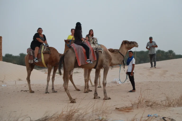 Plutôt que de terminer l’année dans le bruit et la frénésie, nous proposons de célébrer Noël et le Nouvel An au cœur du Sahara tunisien, là où le temps ralentit, les lumières se font dorées et le ciel étoilé vous enveloppe. En format 100 % privatif, nos circuits et excursions dans le désert du Sud tunisien marient authenticité, confort, sécurité et rythme sur-mesure. De Tozeur à Douz, de Matmata à Ksar Ghilane, nous orchestrons chaque détail pour que votre Fête de fin d’année devienne un souvenir majestueux. Pour visualiser les itinéraires et vous inspirer, explorez nos circuits désert conçus et testés par nos équipes terrain. Pourquoi choisir un réveillon dans le Sahara tunisien ? La fin d’année (décembre–janvier) se prête à merveille à la découverte du Sahara tunisien : l’air est clair, les journées sont douces, les soirées fraîches idéales pour un feu de camp et une nuit en campement. Loin des salles bondées, vous vivez un réveillon intime : coucher de soleil sur les dunes, dîner aux lanternes, musique traditionnelle, thé aux herbes, étoiles à perte de vue. Avec nous, chaque itinéraire est privatif : vous décidez du rythme, du niveau de confort, des activités (balade à dromadaire, randonnée facile, 4×4, ateliers artisanaux). Envie d’un avant-goût ? Parcourez nos excursions en Tunisie pour bâtir votre propre parcours. Nos engagements : sécurité, fluidité logistique et hébergements vérifiés Guides officiels et chauffeurs 4×4 expérimentés : navigation sûre, connaissance fine des pistes, histoires d’oasis qui donnent du relief à chaque étape. Logistique optimisée : transferts synchronisés, horaires intelligents pour profiter des plus belles lumières et éviter les foules. Hébergements contrôlés : maisons d’hôtes de charme, campements sahariens confortables, hôtels 3★ à 5★, bivouacs exclusifs sur demande. Cuisine locale : pains mella cuits sous le sable, dattes Deglet Nour, couscous du Sud, infusions d’herbes du désert. Transparence tarifaire : devis clair, inclus/non inclus explicites, personnalisation selon votre budget. Demandez un devis gratuit en 2 minutes. Dès l’atterrissage, libérez-vous du stress : notre navette aéroport vous accueille à Tozeur, Djerba ou Tunis et vous conduit directement vers l’oasis, l’hôtel ou le camp. Programme fin d’année (Noël & Nouvel An) – 5 à 8 jours en privatif Chaque voyage est taillé sur mesure, mais voici un canevas largement plébiscité pour la fin d’année, modulable en 5, 6, 7 ou 8 jours selon vos dates et envies. Jour 1 – Arrivée, oasis et premier regard sur le désert Accueil personnalisé, transfert privé vers votre hébergement. Balade douce dans la palmeraie, briefing avec votre guide, premiers parfums de dattes et d’agrumes. Dîner d’accueil, coucher de soleil si l’horaire le permet. Mise au point des détails du réveillon (musique, menu, champagne, feu de camp). Jour 2 – Chebika, Tamerza, Mides : les oasis de montagne Cap vers les oasis de montagne : Chebika et ses sentiers en gradins, Tamerza et ses cascades, Mides et son canyon spectaculaire. Lumière rasante de l’hiver, pauses photo, café d’oasis. En version active, ajoutez une randonnée montagne & Sahara (facile/modérée) pour saisir la diversité des reliefs. Jour 3 – Chott El Jerid & portes du désert à Douz Traversée du Chott El Jerid, lac salé aux reflets mirage. Arrivée à Douz, surnommée la « porte du désert ». Balade à dromadaire au coucher du soleil (option) puis route vers le camp : tente privative, literie douillette, douche chaude, ciel profond – la magie démarre. Jour 4 – Mer de dunes & bivouac confort Journée hors-piste entre ergs et regs. Pique-nique en pleine nature, initiation au pain tabouna/mella, temps de contemplation. En fin de journée, installation au campement saharien : dîner traditionnel, feu de camp, musique, contes du désert. Observation des étoiles : parfait pour une session astrophotographie. Jour 5 – Ksar Ghilane & source chaude Cap sur Ksar Ghilane, oasis emblématique ourlée de dunes, bain dans la source chaude sous les palmes. Boucle 4×4 vers un fortin pour un panorama à 360°. Fin d’après-midi libre pour savourer le silence du désert. Dîner et nuit au camp ou en maison d’hôtes selon vos préférences. Jour 6 – Matmata troglodytique, Chenini & ksour Route vers Matmata et ses maisons troglodytiques, rencontre avec des familles qui perpétuent un art de vivre millénaire. Puis Chenini (Tataouine) : ksar perché, greniers collectifs, sentiers minéraux et ocres. Séance photo au coucher de soleil. Nuit en maison d’hôtes ou retour vers Djerba. Jour 7 – Djerba & Houmt Souk, artisanat et saveurs Flânerie à Houmt Souk, visite de Guellala et de ses potiers, déjeuner de poissons. Derniers achats (huile d’olive, dattes, céramiques), remise de votre carnet souvenir et transfert aéroport. Jour 8 – Journée bonus & départ Selon l’horaire de vol : mini-excursion (salines, lagunes, villages), atelier cuisine ou balade détente. Transfert retour inclus. Ce squelette s’adapte à l’infini : insertion d’une randonnée montagne & Sahara plus sportive, nuit supplémentaire en plein erg, version « famille » avec étapes plus courtes, ou extension culturelle à Douiret, Toujane, Médenine. Inspirez-vous de nos circuits désert puis modulez chaque journée à votre mesure. Réveillon dans le désert : mise en scène d’un moment inoubliable Décor : dunes dorées, lanternes, table basse saharienne, nappes brodées, coussins berbères. Saveurs : chorba parfumée, méchoui au feu de bois, couscous du Sud, pâtisseries au miel, thé à la menthe et aux plantes d’oasis. Ambiance : musique traditionnelle, silence du désert, ciel strié d’étoiles. Minuit : toasts, douce chaleur du feu, photos et rires – une passage à la nouvelle année unique au monde. Nous réglons tout : menus spéciaux (végétarien, sans gluten), gâteau de fête, bouteille pour le toast, surprises pour les enfants, et un timing pensé pour profiter des plus belles lumières. Hébergements & campements : charme, confort et authenticité Maisons d’hôtes d’oasis : hospitalité chaleureuse, cuisine du terroir, patios parfumés d’agrumes. Hôtels 3★–5★ : confort international, piscines selon étapes, chambres familiales. Campements sahariens : tentes privées avec literie, sanitaires partagés ou privatifs selon catégorie, douches chaudes, électricité aux plages horaires prévues. Bivouacs exclusifs (sur demande) : sensation d’être seuls au monde avec encadrement de sécurité. Chaque adresse est contrôlée par nos soins : propreté, qualité de la literie, calme nocturne, accueil, proximité des sites et sécurité. Comparez les options, puis demandez un devis sur-mesure . Activités phares pour une fin d’année mémorable Balade à dromadaire au coucher du soleil. 4×4 hors-piste : ergs et regs, points de vue confidentiels. Randonnée montagne & Sahara : boucle facile à modérée pour respirer l’hiver saharien. Ateliers & rencontres : tissage, poterie à Guellala, épices, cuisine du désert. Bien-être : bain en source chaude à Ksar Ghilane. Photo & ciel nocturne : coaching lumière bleue/dorée, initiation astrophotographie. Envie de varier ? Piochez des idées dans nos excursions en Tunisie et nourrissez votre imagination avec le blog des excursions en Tunisie . Conseils pratiques fin d’année : météo, équipements, enfants Météo : journées douces, soirées fraîches. Prévoyez couches légères, polaire/coupe-vent, écharpe ou chèche, bonnet pour la nuit. Soleil : lunettes, crème SPF, baume à lèvres, gourde réutilisable. Chaussures : baskets/rando légère pour dunes et sentiers d’oasis. Tech/photo : batteries externes, chiffon anti-sable, petit trépied. Santé : trousse basique (pansements, antipyrétique), assurance voyage. Enfants : étapes courtes, temps de jeu dans les dunes, collation régulière, chapeaux. Côté transferts, réservez l’esprit libre : notre service de navette aéroport assure ponctualité et confort jusqu’au camp ou à l’oasis. Tarifs, disponibilités & devis gratuit Les prix varient selon la durée, le confort choisi, la taille du groupe et les options (randonnées, bivouac exclusif, activités spécifiques). Pour une idée précise et sans surprise, demandez votre devis gratuit et rapide . Pendant que vous explorez, gardez sous la main notre page circuits désert afin de comparer les itinéraires et d’optimiser votre réveillon saharien. Itinéraires inspirants & extensions Grand tour des oasis et ksour : Chebika, Tamerza, Mides, Chenini, Douiret, Ksar Ghilane. Base sur circuits désert . Fin d’année nature active : plus de marche et de panoramas tirés de randonnée montagne & Sahara . Culture & artisanat : troglodytes de Matmata, potiers de Guellala, marchés d’oasis ; voir excursion en Tunisie . Inspiration continue : récits et idées pratiques sur le blog – excursions Tunisie . FAQ – Circuits & Excursions fin d’année (Noël/Nouvel An) au Sahara Combien de jours recommander pour un réveillon saharien ? Nous conseillons 5 à 7 jours pour cumuler dunes, oasis, villages troglodytiques, avec un rythme serein. 3–4 jours restent possibles pour une immersion express. Circuit privatif ou excursion à la journée ? Le circuit enchaîne plusieurs étapes avec nuits en camp/maison d’hôtes. L’excursion (½ journée, 1 journée) est idéale si vous séjournez déjà à Tozeur ou Djerba. Parcourez : excursions en Tunisie et circuits désert . Quelles nuits marquent le plus les voyageurs ? La nuit en camp au milieu des dunes, pour le feu de camp, le silence et le ciel constellé. Inoubliable au soir du 31 décembre. Peut-on intégrer davantage de marche ? Oui : boucles faciles à modérées dans les oasis de montagne et au bord des ergs. Inspirations sur randonnée montagne & Sahara . Comment se passent les transferts aéroport ? Notre navette aéroport vous attend avec pancarte nominative, eau à bord, et s’adapte aux aléas de vol. Quel budget prévoir ? Selon durée, hébergement, options et taille du groupe. Obtenez un devis détaillé sans engagement . Avis & confiance : la parole aux voyageurs Nous attachons une grande importance à vos retours. Consultez les témoignages et notes sur Tripadvisor : Sud Tunisie – Tozeur . Cette transparence reflète notre niveau d’exigence et l’attention portée à chaque détail de votre voyage de fin d’année. Réserver maintenant : simple, rapide, personnalisé Parcourez les itinéraires : circuits désert . Dites-nous vos dates, budget, envies (dromadaire, randonnée, bivouac, artisanat). Recevez votre proposition sur-mesure et verrouillez les meilleurs hébergements pour Noël/Nouvel An. Confirmez avec un devis gratuit clair et complet. Pour prolonger l’inspiration et préparer chaque étape, gardez en favoris : Excursions en Tunisie Blog – excursions Tunisie Randonnée montagne & Sahara Service de navette aéroport Le mot-clé derrière l’émotion : votre fin d’année, votre Sahara Vous cherchez “circuit Sahara Tunisie fin d’année”, “réveillon dans le désert sud tunisien”, “Noël au Sahara”, “Nouvel An sous les étoiles”, “Ksar Ghilane réveillon”, “Chebika Tamerza Mides en hiver”. Nous vous offrons : guides passionnés, logistique fluide, hébergements vérifiés, campements chaleureux, menus de fête, transferts privés et itinéraires 100 % privatifs. À vous le grand air, la lumière d’hiver, les dunes soyeuses et l’intimité d’une nuit saharienne pour tourner la page de l’année… avec style. Prêts à célébrer Noël et le Nouvel An autrement ? Commencez par nos circuits désert , choisissez vos coups de cœur, puis obtenez un devis gratuit et personnalisé . Et pour pimenter l’aventure, piochez des idées dans randonnée montagne & Sahara , excursions en Tunisie et notre blog d’inspiration .